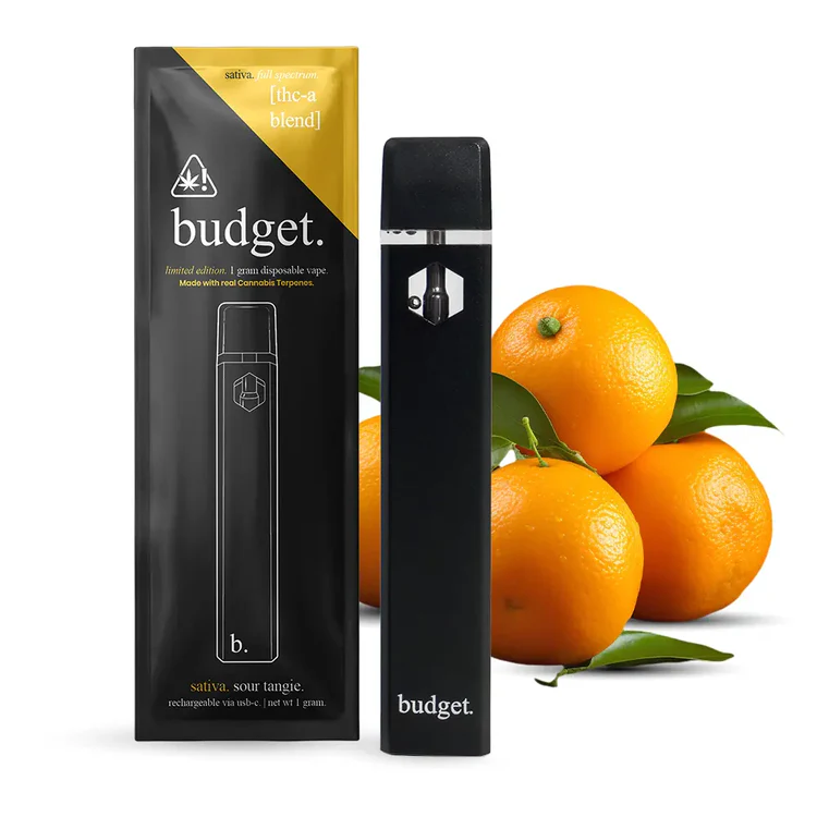 thc, thc vape, thc compound, thc olie, vaporizing thc, thc vapes, thc gummies, thc in vapes, thc hurley, hoelang blijft thc in bloed, thc gummy bears, wat is thc, $thc, hoe lang blijft thc in bloed, thc olie kopen, thc snoep, thc snoepjes, edibles with thc, gummy bear thc, gummy bears with thc, hhc vs thc, thc betekenis, thc edibles, thc gummy, thc gummy bear, thc test, thc vape kopen, edibles thc, gummy thc, thc druppels, thc edible, thc oil kopen, thc tester, edible thc, hoelang blijft thc in je bloed, thc brielle, thc druppel, thc oil, thc phone, thc rap, thc rappers, cbd olie met thc, hoe lang blijft thc in je bloed, oil thc, oil with thc, oils with thc, speekseltest thc, test thc, testing thc, thc brownie, thc brownies, thc gummies kopen, thc in oil, thc olie puur, thc olie werking, thc testing, thc tests, gummie thc, gummies thc, medicinale wiet thc-gehalte, tester thc, thc oli, thc pen, thc rapper, thc speekseltest, thc vape pen, thc waalwijk, thc-p, vape thc, wiet olie met thc, wietolie met thc, adhd and thc, cbd vs thc, delta 9 thc, gummy bears thc, medicinale wiet thc gehalte, thc adhd, thc and adhd, thc drugs, thc druppels kruidvat, thc for adhd, thc liquid, thc p, thc prinsenland, thc vapes online, thc what is, vaping thc, what are thc, what is a thc, what is in thc, wowhead thc, cartridge thc, effect of thc, effects of thc gummies, effects of thc gummy, hoe lang blijft thc in je speeksel, hoelang blijft thc in je speeksel, le thc dans le sang, thc gummies amsterdam, thc gummies effects, thc hangover, thc kopen, thc olie maken, thc paradiso, thc pens, thc rivierenland, thc vs cbd, thc walburg, thc zhe, vape met thc, vape pen thc, what is thc, what is the thc, anti thc spray, cannabidiol en thc, cbd thc, crystalized thc, crystalline thc, delta 8 thc, drinks thc, effects of thc, effects thc, hoe lang blijft thc in je lichaam, hoelang thc-cooh in bloed, is thc drugs, meaning of thc, rock thc, rocks thc, spray thc, test urinaire thc, thc a, thc body detox, thc cart, thc compounds, thc de leyens, thc detox, thc detox amazon, thc drink, thc effect, thc geleen, thc gummies effect, thc in bloed hoe lang, thc in urine drug test, thc meaning, thc nuenen, thc oil releaf.co.uk, thc oils, thc olie prijs, thc recordz, thc shop, thc specialist, thc spray, thc test kruidvat, thc test urinaire, thc uit bloed, thc urine test, thc vape juice, thc vape netherlands, urinalysis thc, urine drug test thc, urine test thc, carboxy thc, cbd olie thc, cbd thc olie, cooh thc, crystal thc, crystallized thc, detox for thc, detox from thc, drink thc, drink with thc, drinking thc, drinks with thc, hoelang blijft thc in plas, hoelang thc cooh in bloed, hoelang thc in bloed, liquid cbd with thc, liquid thc, molecule thc, thc beverage, thc beverages, thc bloed, thc carts, thc cbd olie, thc clean, thc cleaner, thc cleanse, thc crystal, thc crystalline, thc crystals, thc drinkables, thc drinks, thc edibles kopen, thc effects, thc en cbd olie, thc en spray, thc in bloed, thc in urine, thc molecular, thc molecule, thc on drug test, thc vape bestellen online, thc vapes buy, thc vaporizer, thc vapr, thc waarde urine, thc wax, thc wietolie, thc-cooh, urine thc, verschil cbd en thc, verschil hhc en thc, wietolie thc, anti-thc spray, cbd met thc, cbd olie zonder thc, crystals thc, dab thc, haribo thc, hoe lang blijft thc in je urine, hoe lang blijft thc in urine, hoelang blijft thc in je lichaam, hoelang blijft thc in je urine, hoelang blijft thc in urine, hoelang thc in urine, how to get rid of thc from your system, packwoods thc vape, relax bears 300mg thc, test urine thc, thc arnhem, thc cartridge, thc cooh, thc cooh cbr, thc cookie en eten, thc drugtest, thc edible gummies, thc meter, thc near me, thc oils for vapes, thc olie bestellen, thc tester machine, thc urine, thc urine drug test, thc vale, thc vape liquid, thc vape nederland, thc vapes kopen, thc vapes wffect, thc-cooh bloed, thc-vape, thc-waarde urine, vapen thc, vapes met thc, verschil thc en cbd, wiet zonder thc, zuen thc, anti-thc spray review, bad trip thc, bloedtest thc politie, c thc, cbd olie met thc waar te koop, edible gummies thc, edible thc gummies, edible thc gummy, edibles gummies thc, edibles thc gummies, effects of thc on the body, gummy bear thc edibles, gummy edibles thc, hoe lang blijft thc in je bloed wiki, hoe lang thc in urine, hoelang blijft thc in speeksel zitten, hoelang zit thc in je bloed, hoeveel thc mag er in je bloed zitten, hoogste thc gehalte wiet, how much mg thc is too much, is 10 mg of thc too much for a beginner, puff thc, synthetische thc, thc candy, thc cannabis vape delivery store, thc cbd testing, thc chocolade, thc dab, thc edible kopen, thc gummies 10mg, thc gummies netherlands, thc gummy 10mg, thc gummy edibles, thc gummy legal, thc haribo, thc honing, thc meter kopen, thc oil releaf co uk, thc olie apotheek, thc olie ervaringen, thc olie kopen nederland, thc pasta, thc pee test, thc pen vape, thc restaurants, thc specialist nl, thc store near, thc test machine, thc testing machine, thc urinalysis, thc vape amsterdam, thc vape coffeeshop, thc vs thca, thc что это, thc-cooh cbr, thcp vs thc, vape juice thc, vape thc pen, vapes thc, wat is thc olie, 10 oh thc, 150 mg of thc, 200mg thc edibles, ace ultra premium thc, anti thc spray review, audio 456 thc 2, auto thc victory, blue monster thc gehalt, candies with thc, candy thc, cannabis thc achat en ligne, cannabisolie met thc, cbd olie met thc kopen, chemical thc, coffeeshop thc, cookies vapes thc, dabbing thc, dabbing thc wax, detox thc drinks, disposable thc vapes uk, does thc make you fat, edibles bestellen thc, fat banana thc gehalt, hoe lang thc in bloed, hoelang blijft thc in je bloed cbr, hoelang blijft thc in speekseltest, hoeveel mg thc is normaal, hoeveel thc in een joint, hoeveel thc zit er in een joint, how many mg thc is in a joint, how many milligrams of thc in a gram, ile utrzymuje sie thc we krwi, is 150 mg thc veel, is 21 thc high, is 25 thc a lot, is 30 mg thc gummy a lot, jak dlugo utrzymuje sie thc w organizmie, jednorazowka thc, legit thc vapes, martians gummies thc, max thc percentage, mouth swab test thc, olej thc na receptę, overdosis thc, puffs thc, pure thc, puur thc, relax bears thc, rem rebound thc, rosin thc, sp thc, speekseltest thc kopen, synthetisch thc, synthetisches thc, thc 60 mg, thc afkorting, thc and cannabinoids, thc bestellen, thc candies, thc cbd, thc cones, thc cooh bloed, thc cooh bloedonderzoek, thc dans le sang, thc diamonds, thc edibles netherlands, thc gummi, thc gummibärchen, thc gummies 50mg, thc gummies legaal, thc gummy online, thc infused candy manufacturing equipment, thc koekjes, thc lolly, thc lubes, thc nedir, thc olie amsterdam, thc olie indica, thc olie slapen, thc olie te koop, thc olie waar te koop, thc p edible, thc pillen, thc pure, thc rapgroep, thc sds, thc shop germany, thc shops near, thc snus, thc speekseltest kopen, thc strips test, thc test urine, thc thee, thc tiel, thc treatment, thc urine tests, thc vape bestellen, thc vape buy, thc vape germany, thc vape nl, thc vape pens, thc vapes deutschland legal, thc vs hhc, thc werkendam, thc wiet, thc-a, thc-cooh langer in bloed of urine, thc-olie, thca vs thc, thch vs thc, vaporizer thc, waar is thc olie goed voor, wat doet thc, wat doet thc met je, wat doet thc olie, wat is een thc vape, weed thc livraison, what is a high percent of thc, what is thc vape, what's the difference between thc and hhc, wie viel thc in 1 gramm gras, wietolie met thc kopen, wietolie thc kopen, سالت thc, 10 oh thc effects, 10 oh thc vs thc, 10-oh thc, 10mg of thc effects, 26 thc, 30 mg of thc, 420 free thc cleaner spray, 500mg thc edibles, 600mg thc edible, 75mg thc effects, 9h thc, a9-thc, ace thc pens, ace vapes thc, afkickverschijnselen thc, amnesia haze thc thc, as35tadhra thc, banana kush ile thc, barney's coffeeshop amsterdam thc cannabis dispensary reviews, beste thc gummies, beuh hollandaise livraison thc, bevat geen thc, blunt thc, boete rijden onder invloed thc, bonbon au thc, bonbon thc, bonbons thc, brownie edible thc, buy high thc cannabis seeds, can thc cause panic attacks, can thc help adhd, candy with thc, cannabis olie met thc, cannabisolie thc, cbd en thc, cbd of thc olie, cbd zonder thc, chemical compound of thc, chemical compound thc, cookie vapes thc, d9 thc, detox thc, difference between thc cbd, do you sweat out thc, does thc affect blood pressure, does thc cause psychosis, does thc constrict blood vessels, does thc make you sleepy, does thc or cbd get you high, does thc show up on a drug test, drug screening thc, drug test for thc, drug test thc, drugs with thc, edibles met thc, effects of thc on cats, empty thc vapes, flowers thc, frozen hash thc gehalt, golden state puff thc vape, harvestehuder thc, high thc gummy, highest percentage thc weed, hoe lang blijft thc aantoonbaar, hoe lang blijft thc cooh in je bloed, hoelang blijft thc in je plas, hoelang blijft thc in speeksel, hoelang blijft thc zichtbaar in speeksel, hoelang thc in speeksel, hoeveel is 3 microgram thc, hoeveel mg thc in edibles, hoeveel mg thc in joint, how long do thc gummies take to start, how many milligrams of thc gets you high, how many milligrams of thc in one joint, how much thc in a joint mg, how much thc is 10 mg, how to get less high off thc, ile mg thc na ciastko, ile trzyma ciastko z thc, is 10 mg thc edible strong, is 10mg thc edible a lot, is 15 mg thc a lot, is 19 thc strong, is 20 thc a lot, is 20mg thc gummy strong, is thc legal in france 2025, is thc verslavend, kalkulator thc we krwi, kfc thc, lemon haze thc gehalte, lip balm thc, marvin thc, molecular formula of thc, muha thc, oo thc, pot thc, pure thc olie kopen, rick simpson öl thc gehalt, santa maria thc gehalt, selfservice thc, sirop thc, speeksel test thc, spice thc, strains thc, synthetic thc, terpenes and thc, test salivaire thc, test thc salivaire, test thc urine, testing for thc, thc 26, thc acronym, thc beertjes, thc bloedtest, thc butter recipes, thc cannabinoids, thc capsules, thc cartridge kopen, thc carts netherlands, thc cookies, thc diamond, thc distillate, thc drankje, thc drinks netherlands, thc drug, thc drug test, thc drugstest, thc druppels effect, thc edibles cones, thc enschede, thc gummies 1000mg, thc gummies bestellen, thc gummies what is it, thc gummys, thc hapert, thc hengelo, thc in bloed testen, thc in haribo, thc in je bloed, thc in saliva detection time, thc in system for how long, thc in urin, thc in urine hoelang, thc infused candy process equipment, thc infused candy production equipment, thc inhalator, thc kopen nederland, thc kristallen, thc level in blood, thc liquid kopen, thc motors, thc oil vape, thc olie holland & barrett, thc olie hond, thc olie kopen amsterdam, thc olie kopen online, thc olie kosten, thc olie maken met olijfolie voor recreatief, thc olie online kopen, thc olie voordelen, thc olie waar is het goed voor, thc online, thc pen kopen, thc pleisters, thc poeder, thc rock, thc rocks, thc shot, thc shots, thc siroop, thc snoepjes bestellen, thc soorten, thc synthesis, thc syrup, thc t259 ms, thc tattoos, thc test salivaire, thc vape oil, thc vapes amsterdam, thc vapes bestellen, thc vapes brands, thc vapes cartridges, thc vapes rotterdam, thc veghel, thc wat is dat, thc waters, thc wert im blut tabelle, thc zalf, thc zelftest, thc چیست, thc-abbau rechner, thc-olie apotheek, thc-p meaning, thc-p vape, thc.vape, trolli 600mg thc, vape cartridge thc, vaping thc side effects long term, veed 600mg thc, vegan thc edibles online shop, wat is het verschil tussen thc en hhc, wat is thc en cbd, wat is thc vape, wat kost wietolie met thc, weed kaufen thc, what is thc edibles, whole melt thc, wie lang bleibt thc im körper, wiet thc, wietolie met thc bestellen, wietolie thc bestellen, wietolie zonder thc, yart thc, żelki z thc, 0 05 thc, 0 2 thc, 0 3 thc, 0 thc cbd, 0.3 thc, 0.5 thc get you high, 1 liter of thc oil price, 1 mg thc, 1 thc, 1 to 1 thc cbd, 10 0h thc, 10 mg of thc, 10 mg thc, 10 mg thc edible, 10 mg thc edible effects, 10 mg thc effect, 10 oh thc reddit, 10 thc, 10-oh-thc, 100 mg of thc, 100 mg of thc compared to smoking, 100 mg thc, 100 mg thc effects, 100 thc, 1000 mg of thc, 1000 mg thc, 1000 mg thc edible, 1000 mg thc edibles, 1000 mg thc syrup, 1000mg thc, 1000mg thc gummy, 100mg thc, 100mg thc brownie, 10mg thc, 10mg thc edible, 10mg thc edibles, 10mg thc effects, 10mg thc gummies, 10mg thc gummies effect, 11 hydroxy thc, 11 nor 9 carboxy thc, 120 mg thc, 125 mg thc, 125mg thc, 15 mg of thc, 15 mg thc, 15 mg thc gummy effects, 15 thc, 150 mg thc, 150 mg thc edible, 150mg thc, 15mg thc, 15mg thc gummies effect, 180cc thc, 1mg thc, 2 thc, 2.5 mg thc, 2.5mg thc, 20 mg gummies thc, 20 mg of thc, 20 mg thc, 20 mg thc edible, 20 mg thc edibles, 20 mg thc gummies effects, 20 thc, 200 mg of thc, 200 mg thc, 200 mg thc edibles, 2000 mg thc, 200mg thc, 200mg thc edible, 200mg thc edibles effects, 200mg thc gummies, 200mg thc gummy, 20mg thc, 20mg thc edible, 20mg thc gummies effect, 22 thc, 24 thc, 25 mg thc, 25 mg thc effects, 25 mg thc gummy effects, 25 thc, 250 mg of thc, 250 mg thc, 250mg thc, 250mg thc edible, 25mg gummies thc, 27 thc, 28 thc, 2mg thc gummies, 3 5 nanogramm thc, 3 5 nanogramm thc wann erreicht, 3 mg thc, 3 microgram thc, 3 microgram thc per liter bloed, 3.5 nanogramm thc, 30 mg thc, 30 mg thc edible, 30 mg thc edibles, 30 thc, 30 thc strains, 300 mg thc, 300 mg thc edible, 3000 mg thc, 300mg thc, 300mg thc edibles, 33 mg thc, 3mg thc, 40 mg of thc, 40 mg thc, 40 mg thc edible, 40 thc, 40 thc strain, 400 mg thc, 400mg thc, 40mg thc edible, 420 thc, 5 mg of thc, 5 mg thc, 5 mg thc edible, 5 mg thc effects, 5 mg thc gummies side effects, 5 thc, 50 mg of thc, 50 mg thc, 50 mg thc edible, 50 mg thc edible effect, 50 mg thc effects, 50 mg thc gummies effects, 50 mg thc pill, 50 mg thc pills, 50 ng/ml thc, 50 thc, 500 mg of thc, 500 mg thc, 500 mg thc edible, 500 mg thc gummy, 500mg thc, 500mg thc edible, 500mg thc gummies, 500mg thc gummy, 50mg thc, 50mg thc gummies side effects, 50mg thc pills, 5g thc, 5mg thc edibles, 5mg thc gummies effect, 60 mg thc, 60 mg thc edible, 60 thc, 600 mg thc, 600 mg thc gummies, 600 mg thc gummy, 600mg thc, 600mg thc gummies, 600mg thc gummy, 60mg thc, 70 mg thc, 75 mg thc, 8 mg thc, 8 thc, 80 mg thc, 80 thc, 9 thc, 90 thc, 95 thc, 99 thc, 99 thc crystals, 99.9 thc, abbau thc, abbau von thc, absinthe thc, ace thc, ace thc vapes, ace ultra premium thc percentage, aceite de thc, aceites de thc, aces thc, achat cannabis thc, achat thc, achat thc hollande, acheter cannabis thc, acheter du thc, acheter du thc en ligne, acheter thc, acheter thc en ligne, activate thc, activated thc, activating thc, addiction thc, adhd thc, adje thc, afbraak thc, afkorting thc, alcohol thc, alcohol with thc, allergic reaction to thc, allergie thc, alternative thc, amazon drug test thc, amex thc, amitriptyline thc, amnesia cannabis thc dispensary, amnesia cannabis thc dispensary reviews, amnesia ile thc, amsterdam gummies thc, amsterdam thc gummy bears, amsterdam thc pen, amsterdam thc shop, anandamide and thc, antibiotics and thc, appa thc, are thc gummies legal in germany, artikel 140 thc, ashwagandha and thc, at home thc test, at what temp does thc activate, at what temperature does thc activate, autofahren thc, average thc percentage, bad side effects of thc, bad trip edibles thc, badder thc, barcelona thc, bath bomb thc, bedica thc, bediol thc, bedrocan thc, beer with thc, beldia thc, benefit of thc, benefits of thc, benefits thc, best at home thc potency tester, best edible thc, best edibles thc, best low thc strains, best synthetic thc, best thc edible, best thc edibles, best thc for anxiety, best thc mints, best way to detox from thc, best way to detox thc, best way to smoke thc crystals, beste thc vape, betekenis thc, bevat geen thc deutsch, bevat geen thc meaning, bevat geen thc translate, bho thc, bier met thc, bijwerkingen cbd olie zonder thc, bijwerkingen thc, bijwerkingen thc olie, biologische thc olie, biscotti strain thc level, biscotti thc, biscotti thc level, blaastest thc, black diamond thc, blinker thc, blinkers thc, bloedonderzoek thc, bloedtest thc, blood test for thc, blood test thc, blood thc, blue cookie strain thc level, blue cookies strain thc level, blue dream thc content, blue lobster strain thc level, blue lobster thc, blue nerds strain thc, blue zushi strain thc level, blue zushi thc, blue zushi thc level, boiling point of thc, bomb thc, bonbon thc amsterdam, bonbon thc hollande, bonbons au thc, boofing thc, boutique thc, breast milk thc, breastfeeding and thc, brownie thc, brownie with thc, brownie z thc, brownies thc, brownies with thc, bruce banner thc, budder thc, bupropion thc, bupropion thc interaction, butter thc, buy edibles thc, buy liquid thc, buy synthetic thc, buy thc, buy thc butter, buy thc edible, buy thc edibles, buy thc edibles online, buy thc gummies, buy thc oil, buy thc oil online, buying thc, buying thc edibles online, buying thc oil online, caffeine and thc, cake thc, cakes thc, cali plate thc, cali thc, cali thc percentage, can 0.2 thc get you high, can dog smell thc gummies, can dogs smell thc, can dogs smell thc gummies, can thc cause constipation, can thc cause diarrhea, can thc kill you, can thc lower blood pressure, can you be allergic to thc, can you be immune to thc, can you bring thc gummies on an airplane, can you die from thc, can you die of thc, can you fly with thc gummies, can you hallucinate on thc, can you mix cbd and thc, can you overdose on thc, can you overdose on weed thc, can you smoke thc oil, can you snort thc, can you take thc gummies on a plane, canada thc, canapuff thc gummies, cancer and thc, candy runtz strain thc level, caneta thc, canetas thc, canetinha thc, canna gummies thc, cannabinoid thc, cannabinoids thc, cannabinoids vs thc, cannabinoids without thc, cannabis thc olie kopen, cannabis thc testing, cannabisolie zonder thc, cannabisöl mit thc, cannabisöl ohne thc, cannadips thc, capsules thc, caramelle thc amsterdam, card thc, carts thc, cat thc, cats and thc, cats thc, cbd e thc, cbd en thc combineren, cbd en thc olie, cbd feeling vs thc, cbd met thc olie, cbd met thc olie kopen, cbd of thc, cbd olie kruidvat thc, cbd olie met of zonder thc, cbd olie thc vrij, cbd olie zonder thc werking, cbd sans thc, cbd thc verschil, cbd vs thc anxiety, cbd vs thc edible, cbd vs thc gummies, cbd vs thc high, cbd vs thc olie, cbd with no thc for anxiety, cbg thc, cbg vs thc, cbn and thc, cbn thc, cbn vs thc, cbr thc, cbr thc onderzoek, ccell vape pen thc, ce este thc, cereal milk strain thc, cereal milk strain thc level, cereal milk thc, challa thc, chart of thc levels, cheese thc, cheetos thc, chemical composition of thc, chemical formula for thc, chemical formula thc, chemical structure of thc, chemical structure thc, chemical symbol for thc, chocolade met thc, chocolate cones thc, chocolate edibles thc, chocolate thc, chocolate thc edibles, chocolate with thc, chronic thc use, ciastka z thc, citalopram thc, clean thc, cleaner thc, cleanse for thc, cleansing thc, co to jest thc, co2 thc oil, coconut thc oil, coffee and thc, combien de temps le thc reste dans l'urine, combien de temps le thc reste dans la salive forum, combien de temps le thc reste dans le sang, commander thc, concentrated thc, concentrates thc, coned thc, container thc, contains thc, cookie dough thc, cookie thc, cotton candy thc, cristaux thc, crumble thc extract, curaleaf thc oil, czekolada z thc, czy thc obniza testosteron, czy w hiszpanii jest legalne thc, czym się różni cbd od thc, czyste thc, d11 thc, d9 thc gummies, d9 thc vs thc, dab wax thc, dabwoods thc, dangers of thc, decarb thc, decarboxylation thc, decarboxylation thc temp, define thc, definition thc, delta 8 thc vs weed, delta 8 vs thc, delta 9 thc gummies, delta 9 thc vs hhc, delta 9 thc vs thc, delta 9 thc vs thca, delta 9 vs thc, dementia and thc, demi vie thc, demie vie thc, destilados thc, destination thc, detection thc, detox drinks for thc, detox kit for thc, detox kit thc, detox thc how long, diamond thc, difference between hhc and thc, difference between thc and hhc, difference between thc and thca, difference between thc thca, difference between thca and thc, difference hhc and thc, difference hhc thc, difference thc and hhc, difference thc hhc, distill thc, distillate thc, distillate thc oil, distillation of thc, distillation thc, distilled thc, dj thc, dna thc, do cigarette filters stop thc, do geek bars have thc, do si dos strain thc level, do si dos thc, do si dos thc level, do thc gummies expire, do weed leaves have thc, does a thc vape smell, does cigarette filter reduce thc, does full spectrum cbd have thc, does geek bars have thc, does hemp oil contain thc, does hemp protein powder contain thc, does hemp seed contain thc, does hemp seed have thc, does hemp seed oil contain thc, does thc affect liver, does thc affect testosterone, does thc affect the liver, does thc cause anxiety, does thc cause weight loss, does thc damage brain cells, does thc disrupt sleep, does thc gummies expire, does thc help anxiety, does thc help asthma, does thc help seizures, does thc help with sleep, does thc increase heart rate, does thc lower blood pressure, does thc lower blood sugar, does thc lower testosterone levels, does thc make you gain weight, does thc oil expire, does thc oil get you stoned, does thc oil go bad, does thc prevent cancer, does thc raise blood pressure, does thc reduce inflammation, does thc show up in blood tests, does thc show up in blood work, does thc speed up metabolism, does thc speed up your metabolism, dog thc, dog thc toxicity, dogs and thc, dogs on thc, dogs thc, dogs thc toxicity, dope thc, dopuszczalne stężenie thc we krwi, doritos thc, dosage of thc, dosage thc, dose thc, dosering thc olie, dosidos thc, dosidos thc level, dosing thc, download thc hydra, dragon ball thc, dragon balls thc, drinkable thc, drogentest thc, dronabinol thc, drugstest thc, drugstest thc kopen, dry sift hash thc, dry sift hash thc percentage, dry sift hasj thc percentage, dry sift thc, dry sift thc percentage, e thc, e-liquide thc hollande achat, eatables thc, eating thc, edible calculator thc, edible thc calculator, edible thc candy, edible thc chocolate, edible thc content, edible thc dosage chart, edible thc dosage mg, edible thc half life, edible thc mg, edible thc oil, edibles 10mg thc, edibles 500mg thc, edibles amsterdam thc, edibles thc amsterdam, edibles thc bestellen, edibles thc content, edibles thc mg, edibles without thc, eerste keer gepakt met thc, efectos del thc, efectos thc, effect of thc oil, effect thc, effecten thc, effects of cbd vs thc, effects of thc on the brain, effet du thc, effetti del thc, effetti thc, effetto thc, ekstrakt thc, electronic thc tester, elektryk z thc, elektryki z thc, eleven thc, elf thc, epsilon f1 thc, ervaringen thc olie, estratti thc, estratto thc, ethanol extract thc, ethanol extraction thc, ethanol thc extraction, euphoria thc, extract thc, extracting thc, extraction of thc, extraction thc, extracts thc, ez test thc, fast acting thc, fastest way to detox from thc, fastest way to detox thc, flex thc, flushing thc, food with thc, foods with thc, forbidden fruit thc, formule thc, free thc, frozen hash thc, frozen thc, frozen thc gehalt, fruit gummies thc, fruit punch thc, g13 haze thc, gaba and thc, gaba thc, gary payton thc, gdzie kupić vape pen thc, gebruik thc olie, geef mij maar amsterdam thc, geek bar thc, geek thc, geek thc x, gelato 33 thc percentage, gelato 41 thc, gelato 41 thc percentage, gelato cake thc, gelato ile thc, gelato strain thc, gelato thc, gelato thc gehalt, gelato thc percentage, georgia pie thc, germany thc, godfather og thc, godfather og thc level, gominolas thc, gomita thc, gomitas de thc, gorilla glue strain thc, gorilla glue strain thc level, gorilla glue thc, gorilla glue thc level, gorilla glue weed thc, gorilla haze thc level, granddaddy purple thc level, green crack thc, green thc, grenzwert thc, grinder met thc bakje, grow shop en arona las galletas thc canarias, gumbo strain thc level, gumbo thc level, gummi thc, gummibeertjes thc, gummiberen met thc, gummibärchen mit thc, gummibärchen thc, gummibären mit thc, gummies amsterdam thc, gummies met thc, gummies thc 1000mg, gummies thc 500mg, gummies thc amsterdam, gummies thc cbd, gummy bear edibles thc, gummy thc amsterdam, gummy without thc, gummy worms thc, haartest thc, hair drug test thc, hair follicle drug test thc, hair follicle test thc, hair thc, hair thc test, half life of thc, half life of thc in blood, half life thc, halfwaardetijd thc, happy gummies thc, happy teddy fruit gummies thc, happy teddy thc, haribo thc gummies, haribo thc snoepjes, hash oil thc, hash thc, hash thc content, hash thc percentage, hasj maken van thc, hasj thc, hasj thc percentage, hcc thc, hennep thc, hennepolie met thc, hennepolie thc, hennepzaad thc, hhc a thc, hhc and thc, hhc compared to thc, hhc difference thc, hhc effects vs thc, hhc of thc, hhc thc, hhc thc difference, hhc to thc conversion, hhc vs thc effects, hidden hills thc, high thc, high thc autoflower, high thc autoflower seeds, high thc content, high thc edibles, high thc levels, high thc oil, high thc seeds, high thc strains, high thc weed, highest level of thc, highest level thc, highest percentage of thc ever recorded, highest strain of thc, highest thc, highest thc content, highest thc content strain, highest thc edible, highest thc ever recorded, highest thc level, highest thc level strains, highest thc percentage, highest thc percentage ever recorded, highest thc strain, highest thc strains, highest thc weed strains, higrade thc tester, hoe gebruik je thc olie, hoe kom je aan thc olie, hoe krijg je thc uit je bloed, hoe krijg je thc uit je lichaam, hoe krijg je thc uit je urine, hoe lang blijft thc aantoonbaar in urine, hoe lang blijft thc cooh in je urine, hoe lang blijft thc in het speeksel, hoe lang blijft thc in je, hoe lang blijft thc in je bloed autorijden, hoe lang blijft thc in je bloed zitten, hoe lang blijft thc in je lichaam zitten, hoe lang blijft thc in je urine zitten, hoe lang blijft thc in speeksel, hoe lang blijft thc zichtbaar in speeksel, hoe lang duurt het voor thc uit je lichaam is, hoe lang duurt het voordat thc uit bloed is, hoe lang duurt het voordat thc uit je bloed is, hoe lang duurt het voordat thc uit je lichaam is, hoe lang is thc aantoonbaar in bloed, hoe lang is thc aantoonbaar in je bloed, hoe lang is thc aantoonbaar in speeksel, hoe lang is thc aantoonbaar in urine, hoe lang is thc te zien in bloed, hoe lang is thc zichtbaar in speeksel, hoe lang thc cooh in bloed, hoe lang thc in speeksel, hoe lang thc in speekseltest, hoe lang thc zichtbaar in bloed, hoe lang voor thc uit je lichaam is, hoe lang werkt thc, hoe lang zit thc in bloed, hoe lang zit thc in je bloed, hoe lang zit thc in je speeksel, hoe lang zit thc in je urine, hoe lang zit thc in speeksel, hoe maak je thc olie, hoe snel thc uit bloed, hoe thc olie gebruiken, hoe werkt thc, hoe ziet een thc-vape eruit, hoelang blijft thc, hoelang blijft thc aantoonbaar in het bloed, hoelang blijft thc aantoonbaar in het urine, hoelang blijft thc aantoonbaar in je speeksel, hoelang blijft thc aantoonbaar in je urine, hoelang blijft thc cooh in je bloed, hoelang blijft thc in bloed zichtbaar, hoelang blijft thc in haar, hoelang blijft thc in je bloed zitten, hoelang blijft thc in pis, hoelang blijft thc maximaal in je bloed, hoelang blijft thc maximaal in je speeksel, hoelang blijft thc maximaal in je urine, hoelang blijft thc speeksel, hoelang blijft thc zichtbaar in bloed, hoelang blijft thc zichtbaar in urine, hoelang blijft thc zichtbaar speekseltest, hoelang duurt het voor thc uit je lichaam is, hoelang is thc aantoonbaar in urine, hoelang is thc te zien in urine, hoelang is thc uit je bloed, hoelang is thc zichtbaar in je urine, hoelang is thc zichtbaar in speeksel, hoelang thc aantoonbaar in speeksel, hoelang thc aantoonbaar in urine, hoelang thc aantoonbaar speekseltest, hoelang thc cooh in urine, hoelang thc in bloed aantoonbaar, hoelang thc in bloed cbr, hoelang thc in je plas, hoelang thc in speekseltest, hoelang thc in urine cbr, hoelang thc speekseltest, hoelang thc zichtbaar in bloed, hoelang thc zichtbaar in speeksel, hoelang thc zichtbaar speekseltest, hoelang werkt thc, hoelang zit thc in je pis, hoelang zit thc in je speeksel, hoelang zit thc in je urine, hoelang zit thc in speeksel, hoelang zit thc in urine, hoeveel mg thc, hoeveel mg thc in 1 gram, hoeveel mg thc in een joint, hoeveel mg thc is veel, hoeveel mg thc zit er gemiddeld in een joint, hoeveel mg thc zit er in 1 joint, hoeveel mg thc zit er in een gram wiet, hoeveel mg thc zit er in een joint, hoeveel microgram thc in bloed, hoeveel procent thc in wiet, hoeveel procent thc zit er in haze, hoeveel thc, hoeveel thc in amnesia, hoeveel thc in bloed, hoeveel thc in bloed na 1 joint, hoeveel thc in cbd, hoeveel thc in hasj, hoeveel thc is normaal, hoeveel thc mag in je bloed, hoeveel thc mag in je bloed zitten, hoeveel thc mag je in je bloed, hoeveel thc zit er in 1 gram, hoeveel thc zit er in 1 joint, hoeveel thc zit er in haze, hoeveel thc zit er in wiet, holland thc grenzwerte auto, home drug test for thc, home drug test thc, home test for thc, home thc drug test, home thc test, home thc testing, home thc tests, honey oil thc, honey thc, honey thc oil, honey with thc, hoogste thc gehalte, hoogste thc wiet, how can i get thc out of my system faster, how can i pass a swab test for thc, how do i make thc oil, how do you detox your body from thc, how do you get thc out of your system, how do you make thc, how do you measure thc, how does thc make you feel, how does thc tolerance work, how does thc work, how is thc measured, how long can thc be detected, how long do thc edibles last, how long do thc gummies stay in your system, how long do thc stay in your blood, how long does 25mg of thc last, how long does a thc high last edible, how long does it take for thc to wear off, how long does it take to detox from thc, how long does it take to detox thc, how long does thc detox take, how long does thc edible stay in your system, how long does thc edibles high last, how long does thc edibles stay in your system, how long does thc gummies last, how long does thc gummies stay in your system, how long does thc high last, how long does thc last, how long does thc last in blood, how long does thc last in saliva, how long does thc last in the blood, how long does thc last in your blood, how long does thc oil last in your body, how long does thc oil take to work, how long does thc remain in the body, how long does thc show up in urine, how long does thc stay active, how long does thc stay in blood test, how long does thc stay in blood test reddit, how long does thc stay in breastmilk, how long does thc stay in hair, how long does thc stay in hair follicles, how long does thc stay in system, how long does thc stay in the blood, how long does thc stay in the body, how long does thc stay in the hair, how long does thc stay in urine test, how long does thc stay in your blood, how long does thc stay in your blood for, how long does thc stay in your blood test, how long does thc stay in your hair, how long does thc stay in your saliva, how long does thc stay in your system, how long does thc stay in your system for, how long does thc stay in your urine, how long does thc take to hit, how long does thc vape high last, how long does thc work, how long for thc gummies to start, how long for thc honey to kick in, how long is thc detectable, how long is thc detectable in blood, how long is thc detectable in saliva reddit, how long is thc detectable in urine, how long is thc detected in urine, how long saliva test thc, how long thc in blood, how long thc in blood test, how long thc in saliva, how long thc in saliva test, how long thc in urine, how long thc stays in blood, how long until thc leaves your system, how long will thc stay in my system, how long will thc stay in system, how many grams of thc is too much, how many mg of thc, how many mg of thc get you high, how many mg of thc in a 1 gram, how many mg of thc in a 1 gram joint, how many mg of thc in a 1g joint, how many mg of thc in a gram, how many mg of thc in a joint, how many mg of thc in one joint, how many mg of thc is in a gram, how many mg of thc is too much, how many mg thc, how many mg thc in a gram, how many mg thc in a gummy, how many mg thc in a joint, how many mg thc in joint, how many mg thc is too much, how many mgs of thc in a joint, how many milligrams of thc in a joint, how much is 10 mg thc, how much is 100mg of thc, how much is 30 mg of thc, how much is 300mg of thc, how much is 30mg of thc, how much is 50mg of thc, how much is 5mg thc, how much is a lot of thc, how much is too much thc, how much mg of thc in 1 gram of weed, how much mg of thc is in 1g of weed, how much mg thc, how much mg thc in 1 gram, how much mg thc is in 1 joint, how much mg thc is in a joint, how much mg thc per brownie, how much stronger is thcp than thc, how much thc, how much thc edible, how much thc for first time, how much thc in 1 g weed, how much thc in 1 joint, how much thc in a gram, how much thc in a gummy, how much thc in edibles, how much thc in edibles calculator, how much thc in gummies, how much thc in gummy, how much thc in joint, how much thc in one gummy, how much thc in one joint, how much thc is a lot, how much thc is in a brownie, how much thc is in a gram, how much thc is in a space cake amsterdam, how much thc makes you high, how much thc to overdose, how much thc to take first time, how much thc will kill you, how strong is 100 mg of thc, how strong is 100mg of thc, how to clean body of thc, how to clean thc from body, how to clear thc from your body, how to detox from thc, how to detox from thc fast, how to detox my body from thc, how to detox thc, how to detox thc fast, how to detox thc faster, how to detox your body from thc, how to detox your body of thc, how to flush body of thc, how to flush thc out of your body, how to get rid of thc, how to get thc out of saliva, how to get thc out of system, how to get thc out of system in 1 week, how to get thc out of tour system, how to get thc out of your body, how to get thc out of your system, how to get thc out of your system faster, how to get thc out of your system quickly, how to get thc out your system, how to lower thc tolerance, how to make distillate thc, how to make synthetic thc, how to make thc butter, how to make thc candy, how to make thc chocolate, how to make thc diamond, how to make thc diamonds, how to make thc distillate, how to make thc drink, how to make thc edible, how to make thc edibles gummies, how to make thc gummies, how to make thc gummy, how to make thc oil, how to make thc oil for baking, how to make thc resin, how to make thc tea, how to make thc tincture, how to make thc wax, how to measure thc, how to pass a drug test for thc, how to pass a drug test thc, how to pass a saliva drug test for thc, how to pass a saliva drug test thc, how to pass a saliva test for thc, how to pass a saliva thc test, how to pass a thc saliva test, how to pass a thc test, how to pass a thc urine test, how to pass a urine drug test for thc, how to pass a urine test for thc, how to pass drug test thc, how to pass saliva drug test thc, how to pass saliva test for thc, how to pass saliva test thc, how to pass thc drug test, how to pass thc saliva test, how to pass thc urine test, how to pass urine test for thc, how to reduce thc effect, how to test thc content, huile de thc, huile de thc amsterdam, huile thc, huile thc hollande, hur länge stannar thc i blodet, hydra thc, hydroxy thc, ibuprofen and thc, ibuprofen thc, ice cream cake strain thc, ice cream cake strain thc level, ice cream cake thc, ice cream cake thc level, ice cream thc, ice o lator thc, ice rock thc, ice rocks thc, iceolator thc, iene miene mutte lyrics thc, iene miene mutte thc, ile mg thc ma gram, ile procent thc ma moonrock, ile thc ma amnesia haze, ile thc ma amnezja, ile thc ma medyczna, ile thc ma moonrock, ile thc ma najmocniejsza odmiana, ile thc utrzymuje sie w slinie, ile thc utrzymuje się w moczu, ile trzyma faza po thc, ile utrzymuje sie thc w slinie, ile utrzymuje się thc w moczu forum, ile w moczu utrzymuje sie thc, immune to thc, in cat timp iese thc din sange, indiana thc, infused honey thc, infused thc, inhaler thc, inject thc, injecting thc, is 1 gram of thc a lot, is 10 mg of thc a lot, is 10 mg thc edible a lot, is 10 mg thc strong, is 10 mg thc too much for beginner, is 100 mg of thc a lot, is 100 mg thc a lot, is 100mg thc a lot, is 100mg thc gummies strong, is 10mg thc a lot, is 10mg thc gummy a lot, is 10mg thc too much for a beginner, is 15 mg of thc a lot, is 15 mg thc edible a lot, is 150 mg of thc a lot, is 150 mg thc a lot, is 150mg thc a lot, is 18 thc a lot, is 2 mg thc a lot, is 20 mg of thc strong, is 20 mg thc a lot, is 20 thc high, is 20 thc strong, is 200 mg thc a lot, is 25 mg of thc a lot, is 25 mg thc gummies strong, is 25 mg thc gummy strong, is 25mg thc edible a lot, is 27 thc strong, is 28 thc a lot, is 29 thc high, is 30 thc a lot, is 40 mg of thc a lot, is 40mg thc edible a lot, is 5 mg thc a lot, is 5 mg thc strong, is 50 mg of thc a lot, is 50 mg thc a lot, is 50 mg thc gummy strong, is 50mg of thc edible a lot, is 50mg of thc gummies a lot, is 50mg thc gummies strong, is 5mg of thc alot, is 5mg thc a lot for a beginner, is 60 mg of thc a lot, is 60mg of thc a lot, is 75 mg thc a lot, is delta 8 thc, is delta 9 thc, is hash pure thc, is hhc as strong as thc, is hhc better than thc, is hhc like thc, is hhc more dangerous than thc, is hhc or thc stronger, is hhc same as thc, is hhc stronger than thc, is hhc thc, is hhc the same as thc, is hhc worse than thc, is kief pure thc, is thc, is thc a cannabinoid, is thc a depressant, is thc a terpene, is thc a vasodilator, is thc addictive, is thc an acid, is thc an anti inflammatory, is thc bad, is thc bad for dogs, is thc bad for your brain, is thc bad for your heart, is thc bad for your liver, is thc gevaarlijk, is thc hallucinogenic, is thc harddrugs, is thc illegaal, is thc legal, is thc legal in denmark, is thc legal in greece, is thc legal in hungary, is thc legal in netherlands, is thc legal in the netherlands, is thc less harmful than alcohol, is thc olie verslavend, is thc psychoactive, is thc safe, is thc slecht, is thc slecht voor je, is thc toxic, is thc toxic to dogs, is thc water soluble, is thc wiet, is thc-olie schadelijk, is thca the same as thc, is thcp stronger than thc, isolate thc, isolator thc, jak dlugo thc w moczu, jak dlugo utrzymuje sie thc w moczu, jak dzialaja zelki z thc, jak działa thc, jak oszukać test na thc, jak pozbyć się thc z moczu, jayh thc, je bakt er niks van thc, je bent niet alleen thc, je bent niet alleen thc lyrics, jednorazowki z thc, jednorazówka thc 90, jednorazówka z thc, jeleuri cu thc, jelly beans thc, jelly thc, jungle boys thc vape, kali thc, kan je thc zien in een bloedtest, ketama hash thc, ketamine thc, kief thc, kief thc content, kief thc percentage, kilo thc vape, kingo thc, kit thc, kleaner thc, kleaner thc avis, kleaner thc spray, klipper thc, kookpunt thc, kosher kush thc gehalt, krople thc, krople thc pod jezyk, krople z thc, kunnen katten thc afbreken, können hunde thc abbauen, können katzen thc abbauen, la mousse hash thc level, la mousse thc, lab thc, lab thc test, lavender thc, ld50 of thc, ld50 thc, lean thc, lean thc syrup, legal thc, lemon cherry gelato thc, lethal dose of thc, lethal dose thc, lethal thc dose, levels of thc, levels of thc in blood, likit thc, liquid diamond thc, liquid diamonds thc, liquid thc holandia, liquid z thc, liquid z thc cena, liquid z thc holandia, live rosin thc percentage, liver and thc, liver thc, livraison thc, logo thc, long term effects of thc, long term effects of thc on the brain, long term side effects of thc, loom thc, looper thc, lost mary thc, lost thc, lost thc vapes, lotion with thc, love gummies thc, low dose thc, low thc, low thc strains, low thc weed strains, lower thc strains, lowest thc, lowest thc strains, lube with thc, mac 1 strain thc level, mac 1 thc, mac 1 thc level, mac thc, maersk thc rotterdam, mag je een thc vape meenemen in het vliegtuig, make thc oil, making thc gummies, making thc tea, mango and thc, mango haze ile thc, mango thc, mango thc effect, marinol thc, massage oil with thc, max thc, maximum thc, mct oil thc, measure thc, measuring thc, medical benefits of thc, medical thc, medical thc oil, medicinal thc oil, medicinale thc, medicinale wietolie met thc, mediwiet thc olie, melatonin and thc, metabolism of thc, metabolism thc, metabolites of thc, metabolize thc, metabolized thc, mexican haze thc, mg of thc, mg of thc in a joint, mg thc, mg thc edible, mg thc edibles, mg thc in a joint, mg thc in joint, mg thc per joint, micro dose thc, microdose thc, microdose thc edibles, microdosing thc, microdosing thc benefits, microdosing thc edibles, microdosing thc for migraine, miel thc, miernik poziomu thc, miernik thc, mike tyson thc, mild thc gummies, milk thc, mimosa thc, mimosa thc level, miss sophie thc, mister thc, misuratore thc digitale, molecular formula for thc, molecular structure for thc, mondspray tegen thc, mondspray thc, mood thc, moon bar thc, moon rock thc, moon rocks thc, moon rocks thc content, moon thc chocolate bar, moonrock ile ma thc, moonrock ile thc, moonrock thc, moonrock thc level, moonrock thc percentage, moonrock weed thc level, moonrocks thc percentage, moroccan hash thc, moroccan hash thc percentage, mouth swab thc test, muffin thc, muha meds thc, muha thc vapes, mushrooms thc, na co pomaga thc, nachweis von thc, nachweisbarkeit thc, nachweisbarkeit von thc, nadelen van thc, nano delta 9 thc, nano thc, nasal spray thc, nasiona thc automat, nebenwirkung thc, nebenwirkungen von thc, negativ thc diss, negative effects of thc, negative side effects of thc, negative thc test, neospectra thc, nepal hash thc, nerd rope thc, nerd ropes thc, nerd thc, nerds rope thc, nerds thc, niederlande thc grenzwert, niederlande thc grenzwert auto, no thc, no thc cbd, normal thc percentage, northern lights thc content, northern lights thc gehalt, nowadays thc drink, nowadays thc drinks, o'que é thc, od on thc, og kush ile thc, oil syringe thc, olej konopny thc, olej thc, olej thc do waporyzacji, olej thc holandia, olejek thc, olejek thc 80, olejek thc do waporyzatora, olejek thc holandia, olejek z thc, olejki thc, olejki thc holandia, olejki z thc, olie met thc, olie thc, olive oil thc, online edibles thc, online thc, online thc vape, orange bud thc, orange bud thc level, orange cookies thc, orange gummies thc, order thc, order thc edibles online, order thc gummies, order thc oil, order thc oil online, oreo thc, oreoz strain thc level, oreoz thc, oreoz thc gehalt, oreoz thc level, overdose of thc symptoms, overdose on thc, overdose thc symptoms, pac man thc, pack man thc, packs thc, packwood thc, packwoods thc, pacman thc, paracetamol thc, parkinson thc, parkinson's thc, patch thc, peach rings thc, penjamin thc, percent thc, percentage thc, permanent marker strain thc level, permanent marker thc, permanent marker thc level, pharmaceutical thc, phoenix tears thc, piatella hash thc, piatella hash thc percentage, piatella hasj thc percentage, piatella thc, piatella thc percentage, pill thc, plasma thc, plasma thc controller, po jakim czasie działają żelki z thc, positieve speekseltest thc, positive drug test for thc, positive effects of thc, positive thc, positive thc test, pot without thc, potency test thc, potency tester thc, potent thc, powder thc, power plant thc gehalt, prague thc, prijs thc olie, prise de sang thc, products with thc, proma 150 thc, proma elektronika thc, proma thc, proma thc 150, psilocybin and thc, psychose thc, psychosis thc, ptsd and thc, ptsd thc, puff thc amsterdam, puff thc telegram, puff thc usa livraison france, puffy thc, pulse thc, pupillen thc, purchase thc oil, pure thc crystals, pure thc kopen, pure thc liquid, pure thc oil, pure thc oil for sale, pure thc olie, pure thc pasta, pure thc powder, pure thc wax, purpl pro thc tester price, purpl thc tester, purple pro thc tester, purple punch thc, purple punch thc level, purple thc, purple thc tester, quanto dura il thc nella saliva, quanto rimane il thc nel sangue, quanto tempo fica o thc no sangue, quanto tempo o thc fica no sangue, quanto tempo thc fica no sangue, que es el thc, que es thc, quick thc detox, rapgroep thc, rbdjan thc, recommended thc dosage, recommended thc dose, red velvet thc, relax bears 300mg thc review, resin thc, resin thc wax, rijden met thc, rijden onder invloed thc, rijden onder invloed van thc, ritalin and thc, ritalin thc, rocks van de thc, rosin thc gehalt, rosin thc levels, rozki z thc, rożki czekoladowe z thc, rożki z thc, rs11 thc, rs11 thc percentage, rso thc, runtz thc, runtz thc levels, saliva drug test for thc, saliva drug test thc, saliva test for thc, saliva test thc, saliva testing thc, saliva thc, saliva thc test, sans thc, sativa thc, sativa thc percentage, sense thc, serotonin and thc, sertraline and thc, sertraline thc, sex thc, shampoo for thc, shatter thc, shipping thc, side effects of thc, side effects of thc edibles, side effects thc, sigmund daniel thc, silver haze ile thc, silver haze thc gehalte, skittles thc, sklep z thc, skywalker kush thc level, skywalker og thc, skywalker thc, slodycze z thc, snoepjes met thc, snorting thc, snowball thc, snowballs thc, snowcaps thc, soda with thc, solubility of thc, soorten thc, sour diesel strain thc level, sour diesel thc, sour diesel thc content, sour diesel thc gehalt, sour diesel thc level, sour diesel thc percentage, space cake thc, space cakes thc, space cookie thc, space cookies thc, space thc, speekseltest omzeilen thc, speekseltest thc hoelang, speekseltest thc hoelang zichtbaar, speekseltest thc omzeilen, speekseltest thc ontwijken, speekseltest thc politie, speicheltest thc, spice vs thc, spray anti thc amsterdam, static hash thc, static hash thc level, static hash thc percentage, static sift hash thc, static thc, stock thc, straf rijden onder invloed thc, straffen rijden onder invloed thc, strain with highest thc, strain with most thc, strain with the highest thc, strains with high thc, strains with the highest thc, strawberry haze thc gehalt, strawberry haze thc level, strong thc, strongest thc, strongest thc edible, strongest thc edibles, strongest thc gummies, strongest thc oil, strongest thc strain, strongest thc strains, stroopwafel thc, sublingual thc, sucette thc amsterdam, sugar thc, sugar wax thc, sun rocks thc, sunrock thc percentage, sunrocks thc, sunset sherbet thc, super boof strain thc level, super pollen hash thc, super polm thc gehalte, super polm thc-gehalte, super silver haze ile thc, suver nuver thc olie, swab test for thc, swab test thc, symptoms of thc, symptoms of thc overdose, symptoms of thc poisoning, symptoms of thc withdrawal, symptoms of too much thc, syntetyczne thc, syntetyczne thc sklep, synthesis of thc, synthetic thc vs natural thc, syringe thc, syrup with thc, t9hc vs thc, tac thc, tac vs thc, tandarts akkers thc, tea thc, tea with thc, teddy pops thc, telano thc test, telegram thc, telegram thc group, terpene thc, terpenes thc, test for thc potency, test kit thc, test na thc, test na thc apteka, test saliva thc, test salivaire thc pharmacie, test strips for thc, test thc level, test thc levels, test thc saliva, test thc urinaire, test urinaire thc durée pour être négatif, teste salivaire thc, teste thc, teste urinaire thc pharmacie, testing thc levels, testing thc potency, tests salivaires thc, testy na thc, tetrahydrocannabinol thc, teveel thc, teveel thc olie, texas thc, texas thc ban, thc 0 2 procent, thc 0.2, thc 0.3, thc 1, thc 10, thc 10 mg, thc 100, thc 100 mg, thc 100 mg gummies, thc 1000mg, thc 101, thc 10mg, thc 10mg effects, thc 15, thc 180cc, thc 19, thc 20, thc 2025, thc 20mg gummies, thc 21, thc 22, thc 22 procent, thc 24, thc 25, thc 25 mg, thc 26 percent, thc 27, thc 28, thc 28 percent, thc 30, thc 40, thc 420, thc 5, thc 5 mg, thc 50, thc 50 mg, thc 5mg, thc 5mg gummies, thc 600 mg, thc 600mg, thc 7, thc 8, thc 90, thc a flower, thc a flowers, thc aantoonbaar in bloed, thc abbau, thc abbau beschleunigen, thc abbau rechner, thc abbau tabelle, thc abbauen, thc abbreviation, thc abogados, thc acetate, thc achat, thc acheter, thc acid, thc activation temperature, thc activation temperature chart, thc addictive, thc adhd treatment, thc adje, thc afbraak versnellen, thc afbreken, thc afkickverschijnselen, thc after anesthesia, thc album, thc alcohol, thc alcohol extraction, thc allergic symptoms, thc allergie, thc almelo, thc alternative, thc alzheimer's, thc america, thc amp, thc amps, thc amsterdam en ligne, thc amsterdam noord, thc analyse, thc analysis, thc analytical, thc analyzer, thc and, thc and acne, thc and add, thc and alcohol, thc and alzheimer's, thc and anandamide, thc and anxiety, thc and arthritis, thc and asthma, thc and autism, thc and blood pressure, thc and bodybuilding, thc and brain, thc and breastfeeding, thc and caffeine, thc and cancer, thc and cbn, thc and concussion, thc and cortisol, thc and dementia, thc and dog, thc and dogs, thc and dopamine, thc and driving, thc and estrogen, thc and glaucoma, thc and hair, thc and hhc, thc and hhc difference, thc and ibuprofen, thc and liver, thc and melatonin, thc and muscle growth, thc and neuropathy, thc and pain, thc and pain relief, thc and parkinson's disease, thc and psychosis, thc and ptsd, thc and schizophrenia, thc and serotonin, thc and sex, thc and sex drive, thc and sleep, thc and sperm, thc and ssri, thc and terpenes, thc and testosterone, thc and tinnitus, thc and viagra, thc and vitamin c, thc and weight loss, thc and xanax, thc angst, thc angstzustände, thc anti inflammatory, thc antibiotic, thc anxiety, thc appa, thc arthritis cream, thc artikel 140, thc artikel 140 vinyl, thc at destination, thc aus dem urin, thc aus urin, thc autism, thc auto, thc autofahren, thc b, thc back pain, thc badder, thc bakery, thc ball, thc ballen tot we vallen, thc balls, thc balm, thc band, thc bar, thc barcelona, thc bars, thc bath bomb, thc batter, thc batteries, thc battery, thc bear, thc bedeutung, thc beer, thc benefits, thc bergantin hostel, thc betekenis logistiek, thc beveiliging, thc bho, thc bier, thc bijwerkingen, thc bilgaard, thc blinker, thc blinkers, thc bloedprikken, thc blood, thc blood levels in chronic users, thc blood test, thc blunt, thc blut, thc body temperature, thc bodybuilding, thc boer, thc boiling point, thc bomb strain, thc bonbons, thc bonbons bestellen, thc booster, thc boter, thc boter kopen, thc boter maken, thc bottle, thc brain, thc brain damage, thc brain fog, thc brand, thc break, thc breastfeeding, thc brielle tandarts, thc brownies amsterdam, thc brownies online bestellen, thc budder, thc building, thc burger, thc butter, thc buy, thc c8, thc cafe, thc caffeine, thc cake, thc cakes, thc cakes near me, thc calculator, thc cali, thc canada, thc cancer, thc candy amsterdam, thc candy online, thc cannabinoid, thc cannabinoid receptor, thc cannabis, thc caps, thc capsule, thc capsules 1000mg, thc carbonzuur, thc card, thc cart battery, thc cart europe, thc cartridge 1000mg, thc cartridge europe, thc cartridge online, thc carts battery, thc carts nederland, thc cats, thc causes psychosis, thc cbd and cbn, thc cbd cbn, thc cbd cbn gummies, thc cbd difference, thc cbd drink, thc cbd edible, thc cbd olie kopen, thc cbd ratios, thc cbd test kit, thc cbd tester, thc cbd tincture, thc cbd verschil, thc cbg, thc cd, thc charge, thc charges, thc chart, thc chart dosage, thc check, thc checker, thc cheese, thc chemical, thc chemical compound, thc chemical formula, thc chemical formula tattoo, thc chemical structure, thc chemical structure tattoo, thc chemistry, thc chewing gum, thc chips, thc chocolade reep, thc chocolate, thc chocolate bar, thc chocolate bars, thc cleaner spray, thc cleansers, thc clear, thc clinic, thc close up, thc clothes, thc clothing, thc co to jest, thc co to znaczy, thc co2 extraction, thc cocktail, thc cocktails, thc coconut oil, thc coffee, thc coffee shop near me, thc coin, thc cola gummies, thc collection, thc collector, thc commande, thc company, thc compound formula, thc compound structure, thc concentraat, thc concentraat kopen, thc concentrates, thc concentration, thc concentration tester, thc concert, thc condom, thc condoms, thc constipation, thc container, thc container meaning, thc containers, thc content, thc content in a joint, thc content of kief, thc control, thc controle, thc controle politie, thc controller, thc controller plasma, thc cooh abbau tabelle, thc cooh blood test, thc cooh detection times in blood, thc cooh hoelang in bloed, thc cooh in bloed, thc cooh in urine, thc cooh nedir, thc cooh onderzoek, thc cooh test, thc cooh urine test, thc cooh waarde, thc cookie, thc cookies amsterdam, thc cooking oil, thc cortisol, thc cost, thc cotton candy, thc cream for arthritis, thc cream for pain, thc creams, thc creatinine, thc creme, thc crypto, thc cubes, thc cupcake, thc cupcakes, thc cure cancer, thc d, thc dab wax, thc dabs kopen, thc dans la salive, thc dans les urines, thc de, thc de vijf boeken, thc decarb graph, thc decarboxylation, thc decarboxylation curve, thc decarboxylation temp, thc decarboxylation temperature, thc def, thc define, thc definition, thc delivered, thc delivery, thc delivery store, thc dementia, thc dependence, thc depressie, thc depression, thc destination, thc destination charges, thc detectable, thc detection, thc detector, thc detox calculator, thc detox kit, thc detox kits, thc detox pills, thc diabetes type 2, thc diffuser, thc diss, thc distillaat, thc distillate bulk, thc distillate europe, thc distillate oil, thc dj, thc dna, thc doctor, thc doctors, thc dog, thc dogs, thc dopamine, thc dopamine release, thc doping, thc doritos, thc dosage, thc dosage calculator, thc dosage for beginners, thc dose, thc dosing, thc dosis, thc douane, thc dragon ball, thc dragon balls, thc drank, thc drink near me, thc drinks amsterdam, thc drinks near me, thc drinks usa, thc drogentest, thc drogue, thc dronabinol, thc droplets, thc drops, thc drops 1000mg, thc drops amsterdam, thc drug test kit, thc drug test strips, thc drugs meaning, thc druppels adhd, thc druppels apotheek, thc druppels dosering, thc druppels hoeveel, thc druppels hond, thc druppels kopen, thc druppels slapen, thc druppels tegen pijn, thc druppels verslavend, thc druppels voor het slapen, thc druppels voor slapen, thc druppels werking, thc dry mouth, thc duration, thc during pregnancy, thc e, thc e liquid, thc edibels, thc edible dosage, thc edible dosage chart, thc edible dosing, thc edible dosing chart, thc edible mg dosage, thc edibles 1000mg, thc edibles advent calendar, thc edibles bestellen, thc edibles buy online, thc edibles candy, thc edibles dosage, thc edibles dose, thc edibles dosing chart, thc edibles effect, thc edibles eu, thc edibles europe, thc edibles holland, thc edibles meaning, thc edibles mg, thc edibles nederland, thc edibles order, thc edibles order online, thc edibles rotterdam, thc edibles usa, thc effect duration, thc effect on sleep, thc effects on blood pressure, thc effects on body, thc effects on brain, thc effet, thc effetti, thc eleven, thc elfbar, thc elke keer, thc en, thc en cbd, thc en cbd olie kopen, thc en ligne, thc en ligne belgique, thc energy drinks, thc entzug symptome, thc epilepsy, thc erection, thc essen, thc esswaren, thc eten, thc ethanol extraction, thc europe, thc evaporation temperature, thc experience, thc extract, thc extraction, thc extraction machine, thc eye, thc eyes, thc fat cells, thc faydaları, thc fee, thc flex, thc flowers, thc flush, thc flush detox, thc food, thc for anxiety, thc for arthritis, thc for back pain, thc for cancer, thc for cats, thc for chronic pain, thc for depression, thc for dog, thc for dogs, thc for glaucoma, thc for hair growth, thc for insomnia, thc for nausea, thc for pain, thc for pain management, thc for pain relief, thc for sleep, thc for sleeping, thc formule, thc forums, thc foto, thc free, thc free meaning, thc fruit punch, thc fudge, thc fulfil, thc fulfill, thc full form, thc full name, thc gaba, thc game, thc geef mij maar amsterdam, thc geef mij maar amsterdam lyrics, thc geek bar, thc geekbar, thc gehalt tester, thc gehalte, thc gehalte amnesia haze, thc gehalte in bloed, thc gehalte meten, thc gehalte testen, thc gehalte tester, thc gehalte wiet, thc gel, thc gent, thc germany, thc germany shop, thc gezond, thc glijmiddel, thc gorilla glue, thc gran via hostel, thc grenze deutschland, thc grenze niederlande, thc grenzwert, thc grenzwert auto niederlande, thc grenzwert deutschland, thc grenzwert holland, thc groep, thc groningen, thc group, thc group telegram, thc gummibärchen 600mg, thc gummibärchen 600mg trolli, thc gummibärchen amsterdam, thc gummibärchen erfahrungen, thc gummibärchen holland, thc gummibärchen nebenwirkungen, thc gummibärchen niederlande, thc gummibärchen selber machen, thc gummibärchen wirkung, thc gummibären, thc gummie, thc gummies 200mg, thc gummies 20mg, thc gummies 25 mg, thc gummies 30 mg, thc gummies 500mg, thc gummies 5mg, thc gummies 600 mg, thc gummies 600mg, thc gummies airport, thc gummies amsterdam reddit, thc gummies buy, thc gummies canapuff, thc gummies eu, thc gummies how long the effects last, thc gummies london, thc gummies met paracetamol, thc gummies nederland, thc gummies nijmegen, thc gummies nl, thc gummies online, thc gummies order, thc gummies prijs, thc gummies relax, thc gummies review, thc gummies reviews, thc gummies rotterdam, thc gummies side effects, thc gummies strong, thc gummies strongest, thc gummies vegan, thc gummies worms, thc gummy bear recipe, thc gummy bears 15 mg, thc gummy bears amsterdam, thc gummy bears effect, thc gummy bears review, thc gummy beertjes, thc gummy dosage, thc gummy dosage chart, thc gummy ingredients, thc gummy kopen, thc gummy strength, thc gummy vs cbd gummy, thc gummy worms, thc h effects, thc hair, thc hair growth, thc hair loss, thc hair test, thc half life, thc half time, thc halfwaardetijd, thc hallucinaties, thc hallucinations, thc hamburg, thc hanau, thc hand cream, thc handball, thc hash buy, thc hash kaufen, thc hash oil, thc hash oil for sale, thc hasj, thc hatása, thc haven, thc headache, thc health effects, thc heart attack, thc heart palpitations, thc heart rate, thc heerhugowaard, thc helicopters, thc hersenen, thc hhc, thc hhc difference, thc high, thc hiphop, thc hockey, thc hoe lang in bloed, thc home test, thc home tester, thc hond, thc honey, thc honey oil, thc hoodie, thc hormone, thc hotel, thc how long does it last, thc how long in system, thc hurley amstelveen, thc hydra, thc hydra download, thc hydra github, thc hydra windows, thc hyperemesis, thc ibuprofen, thc ice cream, thc ice cream amsterdam, thc ice cream cones, thc icon, thc im blut, thc im blut abbauen, thc im blut autofahren, thc im urin, thc im urin nachweisbar, thc immune system, thc immunity, thc in, thc in a joint, thc in bloed aantoonbaar, thc in blood, thc in blood calculator, thc in blood for how long, thc in blood reddit, thc in blood test, thc in brain, thc in breast milk, thc in cannabinoids, thc in chocolate, thc in czech republic, thc in edibles, thc in fat cells, thc in food, thc in germany, thc in hair, thc in hash, thc in hemp oil, thc in je lichaam, thc in je speeksel, thc in joint, thc in joint vs gummy, thc in lichaam, thc in logistics, thc in one joint, thc in plants, thc in prague, thc in saliva, thc in saliva detection times, thc in saliva test, thc in sativa, thc in shipping, thc in snoep, thc in space, thc in spain, thc in speeksel, thc in speeksel verwijderen, thc in speekseltest, thc in sperm, thc in sperma, thc in system how long, thc in tea, thc in the blood, thc in urine after 3 months, thc in urine cbr, thc in urine door meeroken, thc in urine hoe lang, thc in urine test how long, thc in vape pen, thc in wiet, thc in wietolie, thc indiana, thc induced anxiety, thc induced psychosis, thc inflammation, thc inflammatory, thc infused beverage, thc infused beverages, thc infused candy, thc infused cocktail, thc infused cocktails, thc infused drinks, thc infused edible, thc infused food, thc infused foods, thc infused meaning, thc infused seltzer, thc infused spirits, thc infusion, thc inhaler, thc injection, thc insomnia, thc intox, thc intoxication, thc is, thc is bad, thc is in what drugs, thc isolate, thc isolate powder, thc isolates, thc isolation, thc içeren ilaçlar, thc jak działa, thc japan, thc je bakt er niks van, thc je bent niet alleen, thc je bent niet alleen lyrics, thc jednorazówka, thc jelibon, thc jellies, thc jelly, thc jelly beans, thc joint, thc jonko liefde, thc juice, thc kanker, thc kater, thc kaufen, thc kauwgom, thc kekse, thc kekse wirkung, thc kerkelanden, thc kief, thc kit, thc kleaner, thc kleaner spray, thc koekjes bestellen, thc koekjes kopen, thc kokosolie, thc korte akkeren, thc kosten, thc kreta, thc kristalle, thc kristallen kopen, thc lab, thc lab test, thc lab testing, thc label, thc labels, thc laboratory, thc laboratory testing, thc labs, thc lanzarote, thc latina, thc latina hostel, thc ld50, thc leaf, thc lean, thc lean syrup, thc leden, thc legaal, thc legal, thc legal switzerland, thc legality, thc lethal dose, thc level chart, thc level in urine, thc level test, thc level tester, thc levels, thc levels chart, thc levels in blood, thc levels in urine, thc levels test, thc lever, thc libido, thc liedjes, thc likit, thc likit nedir, thc likit nereden alabilirim, thc likit sipariş, thc limonade, thc liquid 1000mg, thc liquid bestellen, thc liquid diamonds, thc liquid effect, thc liquid prijs, thc liquid uk, thc liquid vape, thc liquor, thc liver, thc liver damage, thc livraison france, thc logistics, thc logistics meaning, thc logo, thc lollies, thc lollies amsterdam, thc lollipop, thc lollipops, thc lolly effect, thc london, thc long term effects, thc lotion, thc lotions, thc love gummies, thc low, thc lube, thc lubricant, thc lyrics, thc machine, thc machine tester, thc magnesium, thc malta, thc mango, thc maritime, thc massage, thc massage oil, thc max, thc meaning in chat, thc meaning in logistics, thc meaning in shipping, thc meaning medical, thc meaning shipping, thc meaning slang, thc measure, thc measure device, thc measurement, thc measurement tool, thc measuring device, thc measuring tool, thc mechanism of action, thc med, thc medicatie, thc medication, thc medicinal, thc medicinal benefits, thc medicine, thc melatonin, thc merch, thc messgerät, thc metabolism, thc metabolite, thc metabolites, thc metabolized, thc meten, thc meter test, thc metre, thc mg, thc mg calculator, thc mg dosage, thc mg dosage chart, thc mg edible dosage chart, thc mg to percentage calculator, thc microdosing, thc microscoop, thc microscope, thc mijn hart, thc mijn hart deel 2, thc milk, thc milligram, thc mint, thc mints, thc mixtape, thc molecular formula, thc molecular structure, thc molecular weight, thc molecule tattoo, thc molecuul, thc moonrock, thc mouth spray, thc muffins, thc music, thc music producer, thc muziek, thc mystery box, thc münster, thc nachweis, thc nachweisbar, thc nachweisbarkeit, thc name, thc nasal spray, thc natural, thc natural line, thc natural line handmade pure wool, thc nausea, thc ne demek, thc near, thc near me now, thc nebenwirkungen, thc nederland, thc negative side effects, thc nelle urine, thc nerd, thc nerd rope, thc nerd ropes, thc nerds rope, thc nerds ropes, thc neurotransmission, thc neutralisieren, thc news, thc nieren, thc nl, thc nm, thc noordside, thc nvt, thc nvt meaning, thc o, thc o que é, thc obdam, thc od, thc of cbd, thc of cbd olie, thc oil amsterdam, thc oil and cancer, thc oil bestellen, thc oil buy, thc oil cancer, thc oil cartridge, thc oil cooking, thc oil cost, thc oil distillate, thc oil dose, thc oil drops, thc oil effects, thc oil extract, thc oil extraction, thc oil extractor machine, thc oil for cancer, thc oil for cooking, thc oil for sleep, thc oil for vape, thc oil high, thc oil machine, thc oil make, thc oil massage, thc oil netherlands, thc oil netherlands buy, thc oil online order, thc oil price, thc oil prices, thc oil recipe, thc oil side effects, thc oil syringe, thc oil uk, thc oil usa, thc oil vape uk, thc ointment, thc olej, thc olie 10, thc olie adhd, thc olie artrose, thc olie autorijden, thc olie bewaren, thc olie bijwerkingen, thc olie coffeeshop, thc olie depressie, thc olie duitsland, thc olie effecten, thc olie eindhoven, thc olie en alcohol, thc olie en autorijden, thc olie en kanker, thc olie gebruik, thc olie gezond, thc olie halal, thc olie hoe gebruiken, thc olie hoeveel druppels, thc olie houdbaarheid, thc olie kanker, thc olie kopen apotheek, thc olie kopen belgie, thc olie kopen den haag, thc olie kopen forum, thc olie kopen in nederland, thc olie kopen prijs, thc olie kruidvat, thc olie legaal, thc olie maken met olijfolie, thc olie nl, thc olie nl reviews, thc olie om te slapen, thc olie online, thc olie online bestellen, thc olie op recept, thc olie parkinson, thc olie psoriasis, thc olie puur kopen, thc olie reuma, thc olie smeren, thc olie sterkte, thc olie stoned, thc olie tegen kanker, thc olie tegen zenuwpijn, thc olie testen, thc olie tester, thc olie transvaal apotheek, thc olie vape, thc olie verdunnen, thc olie waar goed voor, thc olie zelf maken, thc olie zenuwpijn, thc olijfolie, thc olive oil, thc on brain, thc on the brain, thc opioid, thc or hhc, thc oreo, thc overdose, thc overdose treatment, thc overdose what to do, thc overdosis, thc p cartridge, thc p effects, thc p gummies, thc p reddit, thc p vape, thc p vs thc, thc pain, thc pain cream, thc pain relief, thc panic attack, thc paradijs, thc paranoia, thc parkinson, thc parkinson's, thc pasta ervaringen, thc pasta kopen, thc pasta maken, thc paste, thc patch, thc patches, thc peach rings, thc peanut butter, thc percent, thc percentage, thc percentage calculator, thc percentage test, thc percentage test kit, thc percentage testen, thc percentage tester, thc percentage tester kit, thc percentages, thc pet, thc pharm, thc pharma, thc pharmaceutical, thc pharmaceuticals, thc pharmacy, thc pille, thc pillen kopen, thc pills, thc pills 50mg, thc pills for sleep, thc pka, thc plant, thc plants, thc plasma, thc plasma controller, thc player, thc plus, thc podcast, thc poeder bestellen, thc poisoning, thc poisoning in dogs, thc poisoning symptoms, thc police simulator, thc pollen, thc popcorn, thc popcorn edible, thc porn telegram, thc port, thc portugal, thc positief, thc positive drug test, thc pot, thc potency, thc potency test, thc potency tester, thc potency tester amazon, thc potency testing, thc pouches, thc pregnancy, thc price, thc prise de sang, thc procent, thc producer, thc product, thc products, thc proma, thc protect, thc psoriasis, thc psychedelic, thc psychoactive, thc psychonaut, thc psychose, thc psychosis, thc ptsd, thc puff, thc puff türkiye, thc pupillen, thc puur en onversneden, thc que es, thc quote, thc r co to, thc rapper overleden, thc ratio, thc rbdjan, thc receptor, thc receptors, thc receptors in the body, thc receptors in the brain, thc rechner, thc recommended dosage, thc record, thc recordz merchandise, thc rem sleep, thc removal, thc resin, thc restaurant, thc review, thc reviews, thc rooftop bar, thc rosin, thc rotterdam, thc rox, thc rso, thc s, thc saliva, thc saliva detection time, thc saliva test, thc saliva test how to pass, thc saliva tests, thc salive durée, thc salt, thc sativa, thc saudi, thc scale, thc scan, thc scanner, thc schizophrenia, thc screen, thc security, thc seed, thc seltzer, thc seltzers, thc seltzers near me, thc serotonin, thc serotonine, thc server, thc servers, thc sex, thc shake, thc shakes, thc shaking, thc shampoo, thc share, thc shatter, thc shipped, thc shipping, thc shipping meaning, thc shirt, thc shirts, thc shop amsterdam, thc shop europe, thc shop in der nähe, thc shop near, thc shop near my location, thc shops near me, thc side effects, thc side effects long term, thc siedepunkt, thc significado, thc signification, thc significato, thc siroop kopen, thc sirup, thc skittles, thc sklep nl, thc slaapmiddel, thc slaapproblemen, thc slapen, thc sleep, thc sleep apnea, thc sleep drops, thc sleeping, thc sleeping pill, thc sleeping pills, thc snacks, thc sneek, thc sneller afbreken, thc snoep amsterdam, thc snoepje, thc snoepjes amsterdam, thc snoepjes coffeeshop, thc snoepjes effect, thc snoepjes haribo, thc snoepjes kopen, thc snowballs, thc snuiven, thc soda, thc solubility, thc soluble, thc song, thc songs, thc sour diesel, thc space, thc specialist nl review, thc specialist reviews, thc specialist trustpilot, thc spectrometer, thc speekseltest omzeilen, thc speicheltest, thc sperm, thc sperma, thc spice, thc spiegel, thc spijkenisse, thc sport, thc spray 1000mg, thc spray kopen, thc spray speekseltest, thc ssri, thc ssri interaction, thc stad van de zon, thc stand for, thc stands for, thc stick, thc sticker, thc stickers, thc sticks, thc stillen, thc stillzeit, thc stock, thc stock price, thc stop, thc store near me, thc store nearby, thc store nl, thc stores, thc stores near me, thc strain, thc strains, thc streamers telegram, thc strengths, thc strip, thc strips, thc stroopwafel, thc structure, thc structuurformule, thc sugar, thc sugar wax, thc supplements, thc suppositories, thc suppository, thc sweets, thc symptoms, thc syndrome, thc synthetisch, thc synthétique, thc syringe, thc syrup 1000mg, thc süßigkeiten, thc t shirt, thc t shirts, thc tablet, thc tablets, thc tabletten, thc tampons, thc tape, thc tattoo, thc tattooshop, thc tbc, thc tea, thc tee, thc tegelen, thc tegen kanker, thc tegen pijn, thc telegram, thc temperature, thc terminal handling charges, thc terpene, thc terpenes, thc test apotheek, thc test apotheke, thc test apparaat, thc test etos, thc test kit, thc test kits, thc test kopen, thc test lab, thc test omzeilen, thc test politie, thc test speeksel, thc test strip, thc test strips, thc tester amazon, thc tester device, thc tester for potency, thc tester kopen, thc tester purple pro, thc testing kit, thc testing kits, thc testing lab, thc testing labs, thc testosterone, thc tetrahydrocannabinol, thc texas, thc thc, thc thc forum, thc thca, thc the game, thc the game rules, thc tilburg, thc tincture, thc tincture 1000mg, thc tinctures, thc tinctuur, thc tinctuur maken, thc tirso molina hostel, thc to cbn, thc to sleep, thc tolerance, thc tolerance break, thc tolerance too high, thc tolerantie, thc toleranz schnell abbauen, thc tools, thc topical, thc topicals, thc torrent, thc torrents, thc tour, thc toxicity, thc toxicity in dogs, thc transport, thc trichome, thc trichomes, thc trip, thc tropfen, thc tubes, thc tuindorp, thc turbine, thc tv, thc uit je bloed, thc uit je bloed halen, thc uit je lichaam, thc uit je urine, thc uit lichaam, thc uit lichaam verwijderen, thc uit speeksel, thc uit speeksel krijgen, thc uit urine, thc uit urine verwijderen, thc uk, thc ulje, thc under a microscope, thc under microscope, thc university, thc urine cleanser, thc urine detection, thc urine hoe lang, thc urine test how long, thc urine test how many days, thc urine test kopen, thc urine test strips, thc urintest, thc use, thc v, thc v krvi, thc vaoe, thc vape - netherlands, thc vape blinker, thc vape cartridge, thc vape kaufen, thc vape kopen coffeeshop, thc vape niederlande, thc vape prijs, thc vape rotterdam, thc vapen, thc vapes belgium, thc vapes eu, thc vapes nederland, thc vapes netherlands, thc vapes nl, thc vapes what is it, thc vaporization, thc vaporization temperature, thc vapw, thc variants, thc vastgoed, thc vente, thc verdamper, thc vergiftiging, thc vergiftung, thc verslavend, thc verslaving, thc versus cbd effects, thc verwijderen, thc vibes, thc vloeistof, thc vodka, thc voor hond, thc voor honden, thc vrij, thc vrije wiet, thc vs alcohol, thc vs cannabinoids, thc vs delta 9, thc vs thc v, thc vs thcp, thc w moczu, thc w slinie, thc w ślinie, thc waarde, thc waarde bloed, thc waarde in urine, thc waarde meten, thc waarde schildklier, thc warning, thc was ist das, thc water, thc water soluble, thc wax joint, thc wax kopen, thc wax pen, thc we krwi, thc werking, thc werking hersenen, thc wert tabelle, thc werte im blut tabelle, thc werte tabelle, thc westerkappeln, thc what does it do, thc what is it, thc wie lange nachweisbar, thc wie lange nachweisbar urin, thc wietolie bestellen, thc wietolie kopen, thc wietolie slapen, thc wietplant, thc wiki, thc wikipedia, thc wil je weten hoe het voelt, thc wil je weten hoe het voelt lyrics, thc wilhelminapier, thc winegums, thc wirkung, thc wirkung auf nervensystem, thc wirkung gehirn, thc wirkung nervensystem, thc wirkungen, thc with alcohol, thc withdrawal, thc withdrawal anxiety, thc withdrawal diarrhea, thc withdrawal insomnia, thc withdrawal nausea, thc withdrawal reddit, thc withdrawal symtoms, thc withdrawal treatment, thc workout, thc worm, thc wzór, thc yagi, thc youtube, thc zalf kopen, thc zalf maken, thc zalf werking, thc zeef, thc zetpillen, thc zhe spijkenisse, thc zina, thc zina lyrics, thc zipper, thc zoomed in, thc zuen, thc zuiderburen, thc zwijndrecht, thc öl, thc öl kaufen, thc überdosis, thc überdosis was tun, thc αγορα, thc τι ειναι, thc это, thc ماهو, thc چیه, thc とは, thc 意思, thc-abbau beschleunigen, thc-cooh test, thc-cooh urine, thc-cooh waarde, thc-cooh wert bei täglichem konsum, thc-infused drinks, thc-o цена, thc-producten, thc-r, thc.org, thc/cbd test, thc/creatinine ratio, thca to thc, thca to thc temperature, thca vs thc which is stronger, thcs, thcs call, thcs call 2025, thcs grant, thcv vs thc, thcx vs thc, the effects of thc on the brain, the thc game, thh vs thc, thp vs thc, thp420 vs thc, thx thc, tincture of thc, tincture thc, tincture thc cbd, tinctures thc, tinnitus thc, tokyo thc, tolerance thc, too much thc, topical thc, tramadol thc, trichome thc, trichomes thc, triple filtered hash thc, trolli gummies thc, trolli sour brite crawlers thc, trolli sour brite crawlers thc 600mg, trolli thc, trolli thc 600mg, trolli thc candy, trolli thc gummy 600mg, turn thc, type of thc, types of thc, uk thc, uk thc oil, ulei thc, unterschied cbd thc hhc, unterschied hhc thc, unterschied thc cbd, unterschied thc und cbd, unterschied zwischen thc und cbd, urine test for thc, urine test thc how long, urine thc test, urine thc test strips, urinetest thc, vap thc, vape for thc oil, vape thc cartridge, vape thc holandia, vape thc oil, vape weed thc, vaporization temp of thc, vaporization temperature of thc, veed thc gummies, vegan thc gummies, vente thc, verschil cbd thc, verschil hhc thc, verschil thc cbd, verschil thc en hhc, verschil thc hhc, verschil tussen cbd en thc, verschil tussen hhc en thc, verschil tussen thc en cbd, verschil tussen thc en hhc, vibes thc, vitamin c and thc, vitamin c thc, vloeibare thc, vodka thc, voordelen thc, voordelen thc olie, voordelen van thc olie, w jakiej temperaturze waporyzować thc, waar is thc goed voor, waar kan ik thc olie kopen, waar staat thc voor, waar thc olie kopen, waarom gebruiken mensen thc olie, waarom thc olie gebruiken, wacky worms thc, wann wirken thc gummibärchen, wanneer is thc uit je bloed, wanneer is thc uit je lichaam, waporyzator do thc, waporyzator thc, waporyzator z olejkiem thc, was ist der unterschied zwischen cbd und thc, was ist der unterschied zwischen thc und cbd, was ist thc, was macht thc, wat betekent thc, wat doet thc met je bloed, wat doet thc met je hersenen, wat doet thc met je slaap, wat doet thc olie met je, wat doet thc olie met je lichaam, wat is een thc-vape, wat is het verschil tussen cbd en thc, wat is het verschil tussen hhc en thc, wat is thc a, wat is thc drugs, wat is thc gehalte, wat is thc p, wat zijn thc vapes, wat zit er in een thc vape, wat zit er in thc, wax thc, wax vape thc, wedding cake strain thc, wedding cake strain thc level, wedding cake thc, wedding cake thc level, weed high thc, weed online shop thc, weed strains with highest thc, weed with high thc, werking thc, werking thc olie, what are the effects of thc, what can cause a positive thc urine test, what do thc gummies do, what does thc, what does thc do, what does thc do to the brain, what does thc free mean, what does thc mean, what does thc means, what does thc stand for, what is 10 oh thc, what is a high percentage of thc, what is a high thc level, what is a high thc percentage, what is a thc distillate, what is considered high thc, what is d9 thc, what is delta 9 thc, what is distillate thc, what is hhc compared to thc, what is thc cbd, what is thc distillate, what is thc drugs, what is thc free, what is thc gummies, what is thc gummy, what is thc in drugs, what is thc liquid, what is thc oil, what is thc poisoning, what is thc v, what is thc wax, what is thca vs thc, what is thcp vs thc, what is the difference between hhc and thc, what is the difference between thc and hhc, what is the half life of thc, what is the highest thc content, what means thc, what receptor does thc bind to, what receptors does thc bind to, what temp does thc activate, what thc does, what's thc, what's the difference between hhc and thc, whats thc, where can i buy thc, where can i buy thc oil, where can you buy thc, where to buy thc, where to buy thc gummies, where to get thc, which strain has the highest thc, white runtz thc, white widow ile thc, white widow strain thc level, white widow thc levels, whole melt thc vapes, why does thc make you sleepy, wie lange bleibt thc im blut, wie lange bleibt thc im blut nachweisbar forum, wie lange bleibt thc im körper, wie lange bleibt thc im speichel, wie lange bleibt thc im urin, wie lange bleibt thc im urin nachweisbar bei einmaligem konsum, wie lange braucht thc zum abbauen, wie lange ist thc im blut, wie lange ist thc im blut nachweisbar, wie lange ist thc im speichel nachweisbar, wie lange ist thc im urin nachweisbar, wie lange ist thc nachweisbar, wie lange kann man thc nachweisen, wie lange thc im blut, wie lange thc im speichel, wie lange wirkt thc, wie viel mg thc hat ein gramm gras, wie viel mg thc in brownies, wie viel thc gehalt ist gut, wie viel thc hat hash, wie viel thc im blut auto, wie viel thc in einem joint, wie wirkt thc, wiet gummies thc, wiet lolly met thc, wiet met veel thc, wiet met weinig thc, wiet olie met thc kopen, wiet online bestellen thc, wiet snoep thc, wiet thc gehalte, wiet zonder thc kopen, wietdruppels met thc, wietdruppels thc, wietolie kopen met thc, wietolie kopen thc, wietolie met hoge thc, wietolie met of zonder thc, wietolie thc apotheek, wietolie thc slapen, wietzaadjes met hoog thc, wietzalf met thc, wieviel mg thc macht high, wieviel thc hat ein joint, wieviel thc ist erlaubt, wil je weten hoe het voelt thc, wine with thc, wirkung thc, wirkung von thc, wirkung von thc im gehirn, withdrawal symptoms from thc, withdrawal thc, wonka bar thc, wonka bars thc, wzor chemiczny thc, wódka z thc, yellow zushi strain thc level, yellow zushi thc, yellow zushi thc level, youtube thc, zelf thc olie maken, zien thc overleden, zina thc, zit er thc in cbd, zkittlez hash thc, zkittlez strain thc level, zkittlez thc, zombie haze thc, zuen thc dood, zuen thc overleden, zuen van thc, überdosis thc, żelki thc, żelki thc 1000mg, żelki thc 500mg, żelki thc 600mg, żelki z thc cena, żelki z thc holandia, żelki z thc opinię, δ8 thc, δ9 thc, δ9-thc, آزمایش thc, ویپ thc, کارتریج thc, .3 thc, .5mg thc, 0 2 thc effect, 0 3 thc wirkung, 0 thc, 0.2 thc effects, 0.2 thc in mg, 0.2 thc uk, 0.3 thc get you high, 0.3 thc gummies, 0.5 g thc, 0.5 thc, 0.5g thc, 1 gram thc gummy, 1 gram thc vape, 1 mg thc edible, 1 mg thc effects, 1 ml thc, 10 mg gummies thc, 10 mg thc drink, 10 mg thc edibles, 10 mg thc gummies effects, 10 mg thc gummies review, 10 mgs of thc, 10 ml thc, 10 oh hhc vs thc, 10 oh thc opinie, 10 oh thc que es, 10-oh-hhc vs thc, 100 mg de thc, 100 mg gummies thc, 100 mg thc gummy bear, 100 percent thc, 100 pure thc, 1000 mg thc chocolate bars, 1000 mg thc gummies, 1000 mg thc oil, 10000 mg thc gummies, 1000mg gummies thc, 1000mg thc chocolate bar, 100mg thc edibles, 100mg thc gummies effects, 100mg thc lollipop, 10mg thc gummies uk, 10mg thc reddit, 10mg thc wirkung, 11 hydroxy thc edibles, 11 hydroxy thc side effects, 11 hydroxy thc vs delta 9, 11 nor 9 carboxy delta 9 thc, 11 oh thc, 11 thc, 11-hydroxy-thc, 11-hydroxy-thc vs delta-9, 11-nor-9-carboxy-delta-9-thc, 11-oh-thc, 12 mg thc, 12.5 mg thc gummies, 12.5mg thc, 120mg thc edible, 12mg thc, 15 mg gummies thc, 15 mg thc edible, 15 mg thc gummies review, 15 mg thc gummy, 15 ng ml thc urine test, 15 ng thc test, 150 mg gummies thc, 150 mg thc effect, 150 ng/ml thc detection time, 150 thc, 15mg thc effects, 1906 thc, 1:1 thc/cbd, 1mg thc gummy, 1ml thc oil, 2 1 thc cbd, 2 mg thc, 2 micrograms of thc, 2 thc gummies, 2.5 thc, 20 jaar thc, 20 mg thc gummies, 20 ng thc test, 20 ng/ml thc test, 20 thc gummies, 200 mg thc effects, 200 mg thc gummies effects, 200mg thc effects, 20mg thc gummies, 21 thc, 25 mg de thc es mucho, 25 mg of thc, 25 mg of thc is how many grams, 25 ng/ml thc, 2500 mg thc gummies, 250mg thc effects, 25mg of thc effects, 25mg thc gummy effect, 29 thc, 2mg thc edibles, 3 mg thc effects, 3 nanogrammes de thc par millilitre de sang, 3 thc, 3.5 mg thc, 3.5 nanogramm thc wie viel, 30 mg gummies thc, 30 mg thc edible effects, 30 mg thc gummies review, 300 mg of thc, 300 mg thc gummy, 3000 mg thc edibles, 3000mg thc, 300mg gummies thc, 30mg thc, 30mg thc effects, 30mg thc gummies, 30mg thc gummy effects, 35 mg thc, 36 thc, 3d thc molecule, 3mg thc effects, 4 mg thc, 40 mg thc effects, 400 mg thc edibles, 4000 mg thc, 400mg thc edibles, 40mg thc effects, 45 mg thc, 5 mg gummies thc, 5 mg of thc effects, 5 mg thc edible effects, 5 mg thc effect, 5 mg thc gummies, 50 mg thc drink, 50 mg thc gummy bears effects, 50 thc strain, 500 mg gummies thc, 500 thc, 5000 mg thc, 5000 mg thc gummies, 50mg de thc, 50mg gummies thc, 50mg thc effects, 5g thc gummies, 5mg thc, 5mg thc a lot, 5mg thc drink, 5mg thc gummies, 5mg thc reddit, 6 mg thc, 6 mg thc effects, 60 mg thc gummy, 600 mg gummies thc, 600 mg of thc, 600 mg thc candy, 600 thc, 600 thc gummies, 600mg thc ile to, 60mg thc gummies, 617 thc, 7 mg thc, 7.5 mg thc, 9 thc vs thc, 90 mg thc, 90 thc cartridge, 90mg thc, 98 thc, 9h thc co to, 9h thc liquid, 9h thc vape, 9h thc vs thc, 9h thc что это, 9h-thc, 9h-thc effects, 9h-thc vs thc, a thc, a thc company, ace pen thc, ace thc pen, ace thc vape, ace ultra thc, aceite thc, aceites thc, acheter gummies thc, activated charcoal and thc, activated charcoal thc, add thc, adderall and thc, ako dlho je thc v slinách, alcohol vs thc, all thc types, alpha 9 thc, alpha thc, alternative to thc, amber glass thc, amber thc crystals, amex thc hotels, amg haze thc gehalte, amg haze thc-gehalte, amnesia haze ile thc, amnesia haze strain thc, amnesia haze thc, amnesia haze thc percentage, amnesia haze thc-gehalte, amnesia thc, amnesia thc gehalt, amount of thc in a joint, ampersand thc, amsterdam thc gummies, amsterdam thc lollipop, amsterdam thc store, animal cookies thc, anti thc mondspray, anti thc spray kleaner, anti thc test, anti thc urine, antibiotika und thc, antidepressiva thc, api thc, apollo thc, arcdroid thc, are edibles thc or cbd, are geek bars thc, are thc drinks bad for you, are thc edibles legal, are thc gummies addictive, are thc gummies bad for your heart, are thc gummies legal in europe, are thc gummies legal in italy, are thc gummies legal in the uk, are thc gummies strong, are thc vapes allowed on planes, are thc vapes bad, are thc vapes bad for you, are thc vapes harmful, are thc vapes legal in amsterdam, are thc vapes legal in netherlands, are thc vapes more potent than flower, as35taehra thc, ashwagandha thc, at home thc drug test, at what temperature does thc evaporate, at what temperature does thca turn into thc, aurora thc, auto test thc, average thc, average thc content in a joint, average thc in a joint, azithromycin and thc, babeczki z thc, bacio gelato strain thc level, bain de bouche anti-thc, baked bags thc, baked bros thc syrup, baked goods thc, bala com thc, bala de thc, banana haze thc, banana kush strain thc level, band thc, baribo thc gummies, barney's coffeeshop amsterdam thc cannabis dispensary, bedica thc 2 0 olie 10 ml, bedrocan thc 22, bedrocan thc gehalte, bedrolite thc, beer infused with thc, beldia hasj thc, benefits of quitting thc, benefits of thc oil, benjamin thc, berlin thc, best cbd cream with thc, best detox drink for thc, best detox for thc, best detox thc, best thc, best thc alternative, best thc cartridge, best thc carts, best thc detox reddit, best thc drinks, best thc drops for drinks, best thc for fibromyalgia pain, best thc gummies uk, best thc level for beginner, best thc oil, best thc seltzer, best thc strain, best thc strains, best thc vape, best thc vapes, best thc vapes disposable, best way to consume thc gummies, bevande per smaltire thc, bevat geen thc meaning in english, big chief thc, bioavailability of thc, birthday cake thc, black cherry gelato thc, black cherry gelato thc level, black cherry thc, black diamond thc cartridge, black ice thc, black market thc, black runtz strain thc, black runtz thc level, black thc, black thc oil, black widow thc, blackberry kush thc, blackberry kush thc level, bliss thc, bloed zuiveren van thc, blood thc level calculator, bloom thc, blow thc gummies, blue cheese strain thc level, blue cheese thc-gehalt, blue dream strain thc, blue dream strain thc level, blue dream thc, blue dream thc gehalt, blue gelato thc gehalt, blue guava strain thc level, blue lobster strain thc, blue lotus thc, blue magic thc, blue runtz thc, blue runtz thc level, blue sherbet thc level, blueberry muffin thc, blueberry runtz thc level, blueberry strain thc level, blueberry thc-gehalt, boerejongens red velvet cake thc, bolo runtz strain thc level, bolo runtz thc level, bonbon thc effet, bonbon thc livraison france, bonbon thc puissant, bonbons thc legal, booster thc, box thc, breeze thc, brossa thc valencia, brownie de thc, brownie thc edibles, bruce banner thc level, bruce banner weed thc, bubble hash thc, bubble hash thc percent, bubblegum runtz strain thc level, bubblegum wiet thc-gehalte, bud thc tester, bupropion and thc, buy thc cart, buy thc cartridge, buy thc distillate, buy thc distillate oil, buy thc edibles uk, buy thc gummies online, buy thc oil uk, buy thc products, buy thc tester, buy thc tincture, buy thc vape liquid, buy thc vapes, c quoi le thc, ca thc, cafe thc, caffeine and thc reddit, cake thc pen, calculadora de thc, calculate thc for edibles, calculate thc in urine, caleb parker thc, cali haze thc, cali kush thc, cali mousse hash thc, cali mousse thc, cali pen thc, cali usa thc, cali weed thc, california gummies thc, camino thc gummies, can airport dogs smell thc gummies, can airport scanners detect thc edibles, can airport scanners detect thc oil, can airport security detect thc vape, can cats process thc, can cbd turn into thc, can dogs have thc, can dogs process thc, can dogs smell thc edibles, can dogs smell thc vapes, can i carry thc gummies in my checked luggage, can i fly with thc gummies, can i fly with thc gummies in my checked bag, can i take thc gummies on an international flight, can i take thc gummies on the plane, can i take thc vapes on a plane, can i travel with thc gummies, can i travel with thc gummies on plane, can microdosing thc help with anxiety, can sniffer dogs smell thc gummies, can sniffer dogs smell thc vapes, can thc affect pregnancy test results, can thc be stored in fat cells, can thc cause acne, can thc cause depression, can thc cause tinnitus, can thc cure cancer, can thc damage your liver, can thc give you cancer, can thc give you heartburn, can thc gummies be detected in luggage, can thc gummies go bad, can thc gummies lose potency over time, can thc help cluster headaches, can thc help depression, can thc help with nausea, can thc help with sleep, can thc increase testosterone, can thc kill a dog, can thc make you sleep, can thc oil get me high, can thc vapes expire, can thc vapes get you high, can you be hungover from thc, can you bring a thc vape on a plane, can you bring thc gummies on a flight, can you bring thc gummies on a plane, can you bring thc vape on a plane, can you bring thc vapes on an airplane, can you build a tolerance to thc, can you drink alcohol after taking thc gummies, can you drive on cbd without thc, can you eat thc oil, can you freeze edibles thc, can you freeze thc, can you get a hangover from thc, can you get a positive thc test from secondhand smoke, can you mix thc oil with vape juice, can you od from thc, can you overdose on thc edibles, can you smoke thc oil in a joint, can you sweat out thc, can you sweat thc out, can you take a thc vape on a plane, can you take melatonin and thc, can you take thc vapes on a plane, can you travel with thc gummies, can you trip on thc, canapuff 10 oh thc, canapuff thc, canapuff thc gummies review, canapuff thc liquid, canapuff thc shot, candy bar thc vape, candy edibles thc, candy runtz thc, candy runtz thc level, candyland thc, caneta de thc, caneta thc refil, canetas de thc, cannabidiol thc gehalt, cannabinol thc, cannabis ohne thc wirkung, cannabis oil thc, cannabis oil with thc, cannabis sans thc, cannabis thc, cannabis thc oil, cannabis tropfen thc, cannabis vape thc, cannabis vapes thc, cannabis zonder thc, cannabisolie met thc kopen, cannabisolie zonder thc kopen, cannabisöl thc gehalt, cannabisöl thc kaufen, cantourage thc 25, cap junky strain thc, cap junky strain thc level, cap junky thc level, capsule thc, caramelle al thc amsterdam, caramelle con thc, caramelle thc, carbon fiber strain thc level, cart thc, cart thc pen, cartridge thc battery, cartridge vape thc, cb9 vs thc, cbd and thc, cbd drinks no thc, cbd e thc diferença, cbd gummy vs thc gummy, cbd ile ma thc, cbd met thc werking, cbd of thc tegen pijn, cbd oil thc, cbd oil thc content, cbd olie en thc olie, cbd olie jacob hooy thc, cbd olie met thc ervaringen, cbd olie met thc voor hond, cbd olie of thc olie, cbd olie plus thc, cbd olie thc kopen, cbd olie vs thc olie, cbd olie zonder thc bijwerkingen, cbd olie zonder thc holland and barrett, cbd olie zonder thc kopen, cbd sans thc conduite, cbd thc gummies, cbd thc gummies for sleep, cbd thc oil, cbd to thc, cbd und thc unterschied aussehen, cbd vs thc chart, cbd vs thc for sleep, cbd/thc gummies, cbdolie zonder thc bijwerkingen, cbg thc gummies, cbg to thc, cbg9 vs thc, cbn and thc together, cbn vs cbd vs thc, cc9 vs thc, ccell cartridge thc, ce e thc, cereal milk thc level, cetirizine and thc, chanvre sans thc, charlotte's web thc, cheap thc edibles, cheese strain thc, cheesecake thc, chemical compound for thc, chemical formula of thc, chemische thc, cherry bomb thc, cherry gelato thc level, cherry pie strain thc, cherry pie strain thc level, cherry poppers thc, cherry poppers thc level, choco thc, chocolate bar thc, chocolate cone thc, chocolate infused with thc, chocolates thc, ciasteczka z marihuaną thc, ciastka z thc sklep, cleanse drink for thc, cma cgm thc, cnc thc, co to thc, co2 extraction thc, co2 thc, coconut oil thc, coffee infused with thc, coffee with thc, cola thc, combien de temps le thc reste dans la salive, combien de temps le thc reste dans les cheveux, combien de temps positif thc salivaire, combien de temps reste le thc, combien de temps reste le thc au test salivaire, combien de temps reste le thc dans l'urine, combien de temps reste le thc dans le corps, combien de temps reste le thc dans le test salivaire, combien de temps reste le thc dans les cheveux, combien de temps thc dans les urines, combien de temps thc salivaire, combien de temps thc test salivaire, comment enlever le thc de la salive, comprar thc, concentrated thc oil, concussion and thc, cones with thc, contains thc stickers, cookie thc pen, cookie vape thc, cookies gelato thc, cookies thc, cookies thc a vape, cookies thc near me, cookies thc o, cookies thc vape, cookies thc vapes, cookies vape thc, cooking thc, cooking with thc, cornbread thc, cos'è il thc, cosa è thc, cose il thc, countries where thc is legal, cranberry juice and thc, cranberry juice for thc, cranberry juice thc, cranberry juice thc detox, creatine and thc, creme thc, crumble thc, crush thc, cuanto dura el thc en orina, cuanto dura el thc en sangre, cuanto tarda el thc en sangre, cuantos mg de thc tiene 1g, cuantos mg de thc tiene una gomita, curcu thc, czech thc, czopki thc, czy cbd ma thc, czy hhc jest mocniejsze od thc, czy thc obniza cisnienie, czym sie rozni hhc od thc, czym sie rozni thc od hhc, d'tuniz thc, d8 and d9 thc, d8 thc, d8 vs d9 thc, d9 thc distillate, d9 thc vs thca, d9 vs d8 thc, dabben thc, dabs thc, dabwoods thc vape, death by thc, death cake thc, death star gummy thc level, death star thc, decarboxylation thc temperature, decarboxylering thc, delta 10 thc, delta 10 thc effects, delta 10 vs thc, delta 8 thc effects, delta 8 thc spray, delta 8 thc vs delta 9, delta 8 thc vs hhc, delta 8 thc vs thc, delta 8 thc wikipedia, delta 8 vs delta 9 thc, delta 9 is thc, delta 9 thc avis, delta 9 thc kopen, delta 9 thc legale in italia, delta 9 thc molecule, delta 9 thc nedir, delta 9 thc side effects, delta 9 thc sklep, delta 9 thc vape, delta 9 thc vs delta 8, delta 9 vs delta 8 thc, delta 9 vs normal thc, delta thc, delta-8 thc, delta-9 thc, delta-9 thc vs thc, delta-9 vs thc, delta9 thc, depistage salivaire thc, depistage thc test salivaire, destilado de thc, destination thc meaning, destylat thc, detection thc salivaire, detection thc urine, detox calculator thc, detox drink for thc, detox drink thc, detox of thc, detox thc calculator, detox thc fast, detox thc product, deutschland thc autofahren, dhc thc, diabetes and thc, diamond dust thc, diamonds wax thc, diferencia entre hhc y thc, diferencia entre thc y hhc, diferencia hhc y thc, diferencia thc y hhc, diferença entre cbd e thc, difference between cbd and thc, difference between delta 8 and thc, difference between thc and cannabis, difference between thc and delta 9, difference between thc and thcp, difference thc and thca, different thc types, different type of thc, different types of thc, different ways to consume thc, digital thc tester, disposable thc vape, disposable thc vapes, dissolvable thc powder, distillate thc syringe, distillate thc where to buy, dmt vs thc, do cannabis leaves have thc, do cats have thc receptors, do cbd vapes have thc, do cig filters filter thc, do male cannabis plants produce thc, do terpenes contain thc, do terpenes have thc, do thc carts smell, do thc drinks last as long as edibles, do thc gummies affect liver, do thc gummies need to be refrigerated, do thc gummies smell, do thc pens smell like weed, do thc vapes cause popcorn lung, do thc vapes expire, do thc vapes get you higher than flower, do thc vapes smell, do thc vapes smell like weed, do thc vapes smell of weed, do vapes contain thc, doctor thc, does 10 oh thc get you high, does a cigarette filter out thc, does a thc vape get you high, does cbd get you as high as thc, does cbd make thc stronger, does cbd make you less high from thc, does cbd reduce thc effects, does cbd test positive for thc, does cbd turn into thc when heated, does cbd with thc get you high, does cbn make you high like thc, does delta 8 test positive for thc, does delta 9 test positive for thc, does exercise help get thc out of system, does freezing edibles kill thc, does geek bar have thc, does h4cbd contain thc, does hash contain thc, does hash have more thc than weed, does hemp protein contain thc, does hemp protein have thc, does hhc get you high like thc, does hhc test positive for thc, does kava have thc, does less than 0.3 thc get you high, does lost mary have thc, does mango increase thc effects, does sativa have thc, does smoking thc affect fertility, does thc affect blood flow, does thc affect immune system, does thc affect local anesthesia, does thc affect serotonin, does thc affect sperm, does thc affect your immune system, does thc bind to honey, does thc block rem sleep, does thc burn fat, does thc cause dry mouth, does thc cause weight gain, does thc dehydrate, does thc dissolve in ethanol, does thc expire, does thc get you high or cbd, does thc give you migraines, does thc go bad, does thc have a smell, does thc help digestion, does thc help fibromyalgia, does thc help with pain, does thc impact sleep, does thc increase serotonin, does thc liquid get you high, does thc lower body temperature, does thc lower cholesterol, does thc lower dopamine, does thc lower testosterone, does thc lower your immune system, does thc make you hornier, does thc make you hungry, does thc make you paranoid, does thc make your face puffy, does thc matter, does thc mess with anesthesia, does thc mess with serotonin, does thc mess with sleep, does thc metabolize in the liver, does thc need to be heated to be activated, does thc percentage matter, does thc raise metabolism, does thc reduce testosterone, does thc reduce testosterone levels, does thc slow down healing, does thc smell, does thc smell like weed, does thc speed metabolism, does thc syrup get you high, does thc vape get u high, does the liver process thc, does your body produce thc, donkey butter thc level, donuts thc, dope dough thc, dose of thc, double runtz strain thc level, doxycycline thc, dr thc, dragon ball thc price, drewissharing thc tester, droge thc, drops thc gummies, drug test kit thc, drugs thc, drugwipe 5s thc, dubai chocolate edible thc, dubai chocolate thc, dubai thc, dui thc, durata effetto thc, durée thc salive, durée thc urine, dutt pack thc percentage, e liquid thc, e liquide thc, e papieros z thc, easy at home thc test, eating thc distillate, eating thc oil from cart, edible brownies thc, edible chocolate thc, edible gummies thc near me, edible thc cones, edible thc dose chart, edible thc mg chart, edibles chocolate thc, edibles packaging thc, edibles thc 600 mg, edibles thc chart, edibles thc dosage chart, edibles thc gummy bears, edibles thc percentage, efeito do thc, efeitos thc, effects of edible thc, effet gummies thc, effetti del thc sul cervello, effetti thc durata, effetti thc sul cervello, effetto thc durata, effetto thc sul cervello, eigenbedarf thc deutschland, electric thc, elektryki thc, elf bar thc, elvanse thc, en yüksek thc oranı, enlever le thc de la salive, entourage effect thc, entzug thc, epidiolex thc, epilepsy and thc, epilepsy thc, epsilon f1 thc level, esrar thc oranı, exploro thc test, extract thc oil, extracting thc with alcohol, fastest way to get thc out of system naturally, fasting and thc, fat banana thc, feco thc, fertige joints thc kaufen, fireball thc gummies, first time thc gummy dose, flora thc, fluoxetine and thc, fluoxetine thc, foria pleasure thc, foria thc, forms of thc, formula chimica thc, fortnite thc cart, fortnite thc carts, foto's van thc arnhem, frozen hash thc level, frozen sift hash thc, frozen sift hash thc gehalt, frozen sift thc, fryd thc, fryd vape thc, fulfil by thc, fulfil thc, full melt thc, fumeur passif thc, fumeur passif thc test salivaire combien de temps, funny cones thc, funny gummies thc, g13 haze thc gehalt, gary payton strain thc, gary payton strain thc level, gary payton thc level, gary payton thc percentage, gateau thc, gdzie kupić vape thc, geek bar cart thc, geekvape thc, gelato 33 thc, gelato 41 strain thc level, gelato 41 thc level, gelato 45 thc level, gelato hash thc, gelato strain thc level, gelonade strain thc level, gelonade thc, gelonade thc level, georgia pie strain thc level, ghost thc, gilded thc, gmo cookies strain thc level, gmo strain thc level, gmo thc, godfather og strain thc level, godfather og thc percentage, godfather thc, gold thc, golden state puff thc, goma de thc, gomas thc, gomas thc efeitos, gominolas de thc, gominolas thc amsterdam, gomitas con thc, gomitas de thc efectos, gomitas thc, gomme thc, gorilla cookies thc level, gorilla glue #4 thc level, gorilla glue auto thc, gorilla glue ile thc, gorilla glue thc gehalte, gorilla thc, gorilla zkittlez thc, grape ape thc, grape ape thc level, grape gas thc, grapefruit thc interaction, gras ohne thc, green diamond thc, green magic thc, green tea and thc, green tea thc, greenhouse thc, grenzwert thc deutschland, grenzwert thc niederlande, gum thc, gumbo runtz strain thc level, gumbo runtz thc level, gummibeertjes met thc, gummibärchen mit thc amsterdam, gummibärchen mit thc wirkung, gummies 10mg thc, gummies 20 mg thc, gummies 20mg thc, gummies 300mg thc, gummies 30mg thc, gummies 500mg thc, gummies cannabis thc, gummies thc 100mg, gummies thc 10mg, gummies thc 30mg, gummies thc 50 mg, gummies thc 5mg, gummies thc avis, gummies thc nearby, gummies thc online, gummies thc paris, gummies usa thc, gummies without thc, gummy bear thc gummies, gummy de thc, gummy thc edibles near me, gush mints thc level, gusher thc, gushers strain thc level, h3 thc, h9 thc, haier as35tadhra-thc, haier as50tddhra thc, halbwertszeit thc, hanauer thc, hanfblätter thc gehalt, hanföl thc gehalt, happy amsterdam vape thc, happy gummy thc, happy thc, haribo cola thc, haribo gummies thc, haribo snoep thc, haribo snoepjes thc, haribo thc 600mg, harmful effects of thc, haschisch thc, haschisch thc gehalt, hash gummies vs thc gummies, hash olie thc, hash rosin thc, hash thc bestellen, hash thc shop, haze strain thc level, haze thc gehalt, hc thc, hemp oil without thc, hemp thc ban, hemp versus thc, hempcoin thc, herbal thc, hexahydrocannabinol vs thc, hhc or thc, hhc p vs thc p, hhc stronger than thc, hhc thc cbd, hhc thc unterschied wirkung, hhc to thc, hhc unterschied thc, hhc vs thc difference, hhc vs thc dosage, hhc vs thc molecule, hhc vs thc o, hhc vs thc p, hhc vs thc strength, hhc vs thc-p, hi-thc gummies, high rocks thc candy, high thc effects, high thc meaning, high thc strains 2024, high thc strains 2025, high thc tolerance, high thc vapes, high thc vs low thc, highest thc content weed, highest thc ever recorded in flower, highest thc hasj, highest thc indica, highest thc indica strain, highest thc sativa, highest thc strain 2024, highest thc strain 2025, highest thc strains 2024, highest thc strains 2025, highest thc weed ever, himalayan hemp thc free made in nepal, hits thc, hoe haal je thc uit je speeksel, hoe krijg je thc sneller uit je urine, hoe krijg je thc uit urine, hoe lang blijft thc in het bloed, hoe lang blijft thc in je bloed cbr, hoe lang blijft thc in plas, hoe lang blijft thc in speekseltest, hoe lang is thc aantoonbaar in je speeksel, hoe lang is thc te zien in urine, hoe lang thc aantoonbaar, hoe lang thc in je systeem, hoe lang thc in plas, hoe lang voordat thc uit je systeem is, hoe lang werkt thc-olie, hoe snel werkt thc-olie, hoelang blijft canabis thc meetbaar via wang slijm, hoelang blijft thc aantoonbaar in het speeksel, hoelang blijft thc in het speeksel, hoelang blijft thc vape, hoelang blijft thc zichtbaar, hoelang is thc aantoonbaar in speekseltest, hoelang is thc te zien in speeksel, hoelang is thc traceerbaar in speeksel, hoelang speekseltest positief thc, hoelang thc in je bloed, hoelang thc in plas, hoelang thc uit bloed, hoelang thc uit speeksel, hoelang thc zichtbaar in speekseltest, hoelang thc-cooh in urine, hoelang voordat thc uit lichaam is, hoelang zit thc in bloed, hoelang zit thc in het bloed, hoelang zit thc in u bloed, hoelang zit thc in u speeksel, hoeveel mg thc voor edible, hoeveel mg thc zit in 1 joint, hoeveel procent thc zit er in 1 gram, hoeveel thc in haze, hoeveel thc in je bloed na 1 joint, hoeveel thc mag er in je speeksel zitten, hoeveel thc olie per dag, hoeveel thc zit er in cali, hoeveel thc zit er in cbd, hoil thc vape, holland and barrett thc, holland autofahren thc, holland thc autofahren, honey bee thc, honey pack thc, honeypot thc, honing met thc, how bad is thc, how do thc gummies make you feel, how do you flush thc out of your system, how do you get thc out of your system fast, how do you take thc oil, how do you use a thc vape pen, how does a thc vape work, how does cbd affect thc, how does thc cause psychosis, how does thc leave the body, how does thc percentage work, how fast do thc gummies kick in, how fast does thc tolerance increase, how fast does tolerance to thc build, how fast thc out of system, how is thc excreted from the body, how is thc made, how is thc metabolised, how is thc metabolized, how long are thc gummies good for, how long can a thc high last, how long can thc be detected in saliva, how long can thc stay in your system, how long can you detect thc in urine, how long do thc carts last, how long do thc edibles stay in your system, how long do thc gummies affect you, how long do thc gummies effects last, how long do thc gummies last, how long do thc gummies take to hit, how long do thc gummies take to wear off, how long do thc gummies take to work, how long do thc vapes last, how long do the effects of edible thc last, how long does 10mg thc stay in your system, how long does 1ml thc vape last, how long does 20mg of thc last, how long does 25mg of thc stay in your system, how long does a 1ml thc vape last, how long does a thc gummy high last, how long does a thc gummy last, how long does a thc gummy stay in your system, how long does a thc vape last, how long does a thc vape stay in your system, how long does a thc vape take to kick in, how long does edible thc take to kick in, how long does it take for thc gummy to hit, how long does it take for thc to kick in, how long does it take for thc vape to hit, how long does it take thc to kick in, how long does it take thc to leave the system, how long does thc, how long does thc affect your brain, how long does thc cooh stay in system, how long does thc from edibles stay in your system, how long does thc gummy last, how long does thc oil effects last, how long does thc oil high last, how long does thc oil last, how long does thc oil stay good, how long does thc overdose symptoms last, how long does thc remain detectable in urine, how long does thc stay, how long does thc stay in blood, how long does thc stay in fat, how long does thc stay in saliva glands, how long does thc stay in system edibles, how long does thc stay in the brain, how long does thc stay in urine, how long does thc stay in your body, how long does thc stay in your mouth, how long does thc stay in your system from edibles, how long does thc stay in your urine from edibles, how long does thc stays in saliva, how long does thc stays in your body, how long does thc syrup kick in, how long does thc take to kick in, how long does thc take to work, how long does thc vape stay in system, how long does thc vape stay in your system, how long does thc vape take to work, how long does thc-o last in your system, how long for thc edibles to kick in, how long for thc edibles to leave your system, how long for thc edibles to take effect, how long for thc gummies to kick in, how long for thc gummy to work, how long for thc to hit, how long for thc to kick in, how long for thc to leave body, how long for thc to take effect, how long for thc vape to hit, how long for thc vape to kick in, how long is thc detectable in hair, how long is thc detectable in saliva, how long is thc detectable in urine reddit, how long is thc detectable in your urine, how long is thc in your system for urine test, how long is thc stored in your fat, how long should a thc break be, how long thc, how long thc detectable in urine, how long thc edibles stay in your system, how long thc effects last, how long thc in system for urine test, how long thc in your system, how long thc stay in urine reddit, how long till thc gets out of blood, how long till thc gummy kicks in, how long till thc kicks in, how long to reset thc tolerance, how long to thc gummies last, how many 10 mg thc gummies should i take, how many drops of thc oil, how many grams of thc, how many grams of thc for beginners, how many mg of thc edibles is too much, how many mg of thc gummies is good, how many mg of thc in 1 gram, how many mg of thc in amsterdam space cake, how many mg of thc in edible, how many mg of thc in edibles, how many mg of thc in edibles is good, how many mg of thc is a lot, how many mg of thc is in a joint, how many mg of thc is in one joint, how many mg of thc is too much edibles, how many mg of thc to feel effects, how many mg of thc to get a good high, how many mg of thc to get you high, how many mg thc edible, how many mg thc edibles, how many mg thc in a typical joint, how many mg thc in space cake, how many mg thc is good for beginner, how many milligrams of thc is too much, how many puffs in 1ml thc vape, how many puffs of a thc vape do you need, how many thc gummies, how many thc gummies can i take a day, how many thc gummies can you take in a day, how many thc gummies is too many, how much are thc vapes, how much is 0.2 thc, how much is 0.3 thc in mg, how much is 100 mg thc gummies, how much is 100mg of thc gummies, how much is 40mg of thc, how much is too much thc mg, how much mg of thc gets you high, how much mg of thc is a lot, how much mg of thc is in a gram, how much mg of thc to feel effect, how much mg of thc to feel high, how much mg thc gets you high, how much mg thc is in 1 gram, how much thc can butter hold, how much thc did weed in the 70s have, how much thc does 1 gram of weed have, how much thc does a blunt have, how much thc does a joint have, how much thc edible should i take, how much thc first time edible, how much thc for first time edible, how much thc gets you high mg, how much thc gummy, how much thc gummy for beginners, how much thc in 1 gram of weed, how much thc in a gram of weed, how much thc in a hit, how much thc in a joint average, how much thc in a joint vs edible, how much thc in an edible gets you high, how much thc in edibles makes you high, how much thc in hemp, how much thc in kief, how much thc in one gram, how much thc in one puff of vape, how much thc is a lot in a gummy, how much thc is deadly, how much thc is enough, how much thc is good, how much thc is good for beginners, how much thc is in a brownie edible, how much thc is in a gram of weed, how much thc is in a spliff, how much thc is in hhc, how much thc is in kief, how much thc is in one gummy, how much thc is in one puff of a joint, how much thc is in resin, how much thc is lethal, how much thc is too much for a person, how much thc mg, how much thc o should i take, how much thc oil should you take, how much thc per body weight, how much thc per day, how much thc per gummy, how much thc should a first timer take, how much thc should you take, how much thc to be high, how much thc to start with, how much thc to take, how much thc will get you high, how often can you take thc gummies, how quickly does thc tolerance build, how strong are thc drinks, how strong is 500mg of thc, how strong is 50mg of thc, how strong is 5mg of thc, how strong is thc, how strong is thcp compared to thc, how to activate thc, how to beat a mouth swab test for thc, how to boost your high thc, how to buy thc, how to calculate thc in edibles, how to calculate thc percentage, how to clean blood from thc, how to clean my body from thc, how to clean thc from your system, how to clean thc out of your system, how to clean thc vape, how to clean your system of thc, how to clear thc from your system, how to counteract thc effects, how to eliminate thc from body, how to extract thc from flower, how to extract thc oil from flower, how to extract thc with ethanol, how to flush out thc, how to flush out thc from your system, how to flush thc from your system, how to flush thc out, how to flush thc out of my body, how to flush thc out of your system, how to flush thc out your system, how to get rid of thc fast, how to get rid of thc for drug test, how to get rid of thc from your body, how to get rid of thc hangover, how to get rid of thc high, how to get rid of thc metabolites fast, how to get thc out of blood faster, how to get thc out of body, how to get thc out of urine, how to get thc out of your blood, how to get thc out of your saliva, how to get thc out of your system fast, how to get the thc out of your system, how to increase thc tolerance, how to inhale a thc vape properly, how to inhale thc vape, how to lower tolerance to thc, how to make edible thc, how to make hash from thc, how to make thc, how to make thc brownies, how to make thc coconut oil, how to make thc cooking oil, how to make thc crystals, how to make thc distillate gummies, how to make thc drops, how to make thc e juice, how to make thc gummies at home with flower, how to make thc gummies with oil, how to make thc gummies with store bought gummies, how to make thc gummy bears, how to make thc gummy bears from scratch, how to make thc hash, how to make thc honey, how to make thc infused butter, how to make thc infused drink, how to make thc infused drinks, how to make thc lean, how to make thc lollipops, how to make thc milk, how to make thc oil with alcohol, how to make thc sugar, how to make thc vape juice, how to make thc water, how to make water soluble thc, how to measure thc levels at home, how to metabolize thc faster, how to pass a drug test for thc urine, how to pass a mouth swab test for thc, how to pass a urine test thc, how to pass mouth swab test for thc, how to pass thc test, how to purge thc from your system, how to quit thc, how to reduce thc effects, how to reduce thc from body, how to remove thc from body, how to remove thc from saliva, how to remove thc from saliva test, how to remove thc from your body, how to reset thc tolerance, how to smoke a thc vape, how to smoke thc crystal, how to smoke thc vape, how to sober up from thc, how to speed up thc out of your system, how to stop smoking thc, how to take thc, how to take thc oil drops, how to test for thc, how to test for thc levels, how to test negative for thc, how to test thc, how to test thc level, how to test thc levels, how to unclog a thc pen, how to unclog a thc vape, how to unclog thc vape, how to use a thc vape, how to use a thc vape pen, how to use thc gummies, how to use thc liquid, how to use thc oil in food, how to use thc vape, htc thc, huile de cannabis thc, huile de thc hollande, hulkberry thc, hur länge finns thc kvar i blodet, hva er thc, hvad er thc, hybrid thc effects, hyperdyn thc, höchster thc gehalt, höchster thc gehalt der welt, höchster thc-gehalt der welt, ibuprofen and thc gummies, ibuprofen with thc, ice cream cones thc, ice cream thc level, ice moonrock thc, ice strain thc level, ice thc, if you have low body fat does thc, ile czasu thc we krwi, ile thc sie utrzymuje w organizmie, ile trzyma thc we krwi, ile utrzymuje sie thc w ślinie, immun gegen thc, import thc, in germania è legale il thc, incoterms thc, indica thc content, indica thc oil, indica vs sativa cbd vs thc, indica vs sativa thc, indica vs sativa thc cbd, indica vs sativa thc content, infused drink thc, infused drinks thc, intossicazione da thc, intossicazione thc, ireland thc, irie water thc, is 0 2 thc a lot, is 0.2 thc a lot, is 0.3 mg of thc a lot, is 10 mg a lot of thc, is 10 mg of thc strong, is 10 mg thc a lot, is 10 mg thc gummy strong, is 10 thc strong, is 100 thc a lot, is 1000mg thc vape strong, is 100mg thc edible a lot, is 100mg thc strong, is 10mg of thc a day too much, is 10mg of thc too much, is 10mg of thc-a day too much, is 10mg thc a high dose, is 10mg thc a lot edible, is 10mg thc edible too much, is 10mg thc too much, is 10mg thc veel, is 125 mg of thc a lot, is 15 mg a lot of thc, is 15 mg thc gummy a lot, is 15 thc a lot, is 150mg thc strong, is 18 thc high, is 2 mg of thc a lot, is 2.5 mg thc a lot, is 2.5 mg thc strong, is 20 mg thc edible a lot, is 20 mg thc strong, is 2000mg thc vape strong, is 200mg thc edible a lot, is 200mg thc strong, is 20mg thc edible strong, is 20mg thc gummies strong, is 23 thc a lot, is 24 thc a lot, is 24 thc high, is 24 thc strong, is 25 mg of thc gummies a lot, is 25 mg of thc too much, is 25mg of thc edible a lot, is 26 thc high, is 26 thc strong, is 27 thc high, is 28 thc high, is 30 mg of thc a lot, is 30 mg thc a lot, is 30 mg thc too much, is 300mg thc a lot, is 30mg thc edible strong, is 30mg thc gummy strong, is 33 mg of thc a lot, is 34 thc strong, is 40 mg thc a lot, is 40 mg thc gummy a lot, is 4mg thc strong, is 5 mg of thc a lot, is 5 mg of thc strong, is 5 mg thc gummies a lot, is 5 mg thc gummy a lot, is 5 mg thc gummy strong, is 5 thc strong, is 50 mg of thc gummies a lot, is 50 mg thc edible strong, is 50 mg thc gummies a lot, is 50 mg thc strong, is 50 thc a lot, is 500 mg of thc a lot, is 500 mg of thc strong, is 500 mg thc a lot, is 500mg thc gummies strong, is 500mg thc gummy strong, is 500mg thc strong, is 50mg of thc too much, is 50mg thc a high dose, is 50mg thc a lot, is 50mg thc edible a lot, is 5mg thc edible strong, is 5mg thc gummy strong, is 5mg thc strong, is 6mg of thc a lot, is 7.5 mg of thc a lot, is 70 mg of thc a lot, is 75mg thc a lot, is 80 mg thc a lot, is 80mg thc a lot, is 83 mg of thc a lot, is 90 mg of thc a lot, is a 10 mg thc gummy strong, is a 30 mg thc gummy strong, is a 5 mg thc gummy strong, is a thc vape bad for you, is cannabis and thc the same thing, is cannabis the same as thc, is d9 the same as thc, is delta 8 thc natural or synthetic, is delta 8 the same as thc, is delta 9 real thc, is delta 9 stronger than thc, is delta 9 thc legal, is delta 9 thc natural, is delta 9 thc natural or synthetic, is delta 9 the same as regular thc, is geek bar thc, is hhc more potent than thc, is hhc similar to thc, is hhc weaker than thc, is it legal to take thc gummies on a plane, is it thc or cbd that gets you high, is nano thc safe, is t9hc stronger than thc, is thc 0 legal, is thc a compound, is thc a hard drug, is thc a laxative, is thc a muscle relaxer, is thc a neurotoxin, is thc a sedative, is thc a stimulant or a depressant, is thc acidic, is thc an aphrodisiac, is thc an opioid, is thc an upper or downer, is thc and thca the same thing, is thc anti inflammatory, is thc bad for you, is thc edibles bad for you, is thc fat soluble, is thc gezond, is thc good, is thc hetzelfde als hasj, is thc illegal in italy, is thc illegal in spain, is thc legaal in griekenland, is thc legal in croatia, is thc legal in czech, is thc legal in czech republic, is thc legal in europe, is thc legal in florida, is thc legal in georgia, is thc legal in mallorca, is thc legal in malta, is thc legal in switzerland, is thc legal uk, is thc lipid soluble, is thc lipophilic, is thc liquid, is thc natural, is thc natural or synthetic, is thc neuroprotective, is thc o psychedelic, is thc oil legal, is thc oil legal in amsterdam, is thc oil legal in portugal, is thc oil legal in uk, is thc or hhc stronger, is thc p safe, is thc physically addictive, is thc schadelijk, is thc stimulant or depressant, is thc strong, is thc synthetic, is thc the same as cannabis, is thc vape legal in netherlands, is thc x safe, is thc-p safe, is thca as strong as thc, is thca stronger than thc, is thca thc, is there thc in edibles, is there thc in geek bars, is there thc in leaves, is there thc in stems, isolator hash thc, ist 10mg thc viel, ist thc ein nervengift, ist thc legal in deutschland, ist thc nachweisbar, italian ice thc level, italy thc, izolat thc, jacob hooy cbd thc content, jak dlouho je thc ve slinách, jak dlugo thc utrzymuje sie w slinie, jak pozbyc sie thc z krwi, jak pozbyc sie thc z organizmu, jak pozbyć się thc ze śliny, jak przestac palic thc, jak uzyskac recepte na thc, jak wypłukać thc z organizmu, jak zbic thc, jak zrobic olej z thc, jak zrobic zelki z thc, jak zrobić liquid z thc, jaka odmiana marihuany ma najwięcej thc, japan thc, jealousy strain thc, jealousy thc, jealousy weed strain thc level, jednorazówki thc, jeeter thc, jelly thc gummies, jenny kush strain thc level, jungle boys thc pen, k2 weed strain thc level, kali weed thc, kalkulator thc, kan een kind perongeluk teveel thc binnen krijgen, kan je thc gummys in je bloed vinden, kann man immun gegen thc sein, kartridż thc, katzen thc abbauen, keef thc drink, kekse mit thc, kelly weed thc, ketama gold hash thc, ketama gold hash thc-gehalt, ketamine and thc, ketamine vs thc, khalifa kush thc percentage, kilogrammes thc, king hassan hasj thc, kleaner spray anti thc, kleaner spray thc, kleaner thc opinie, klipper thc hamburg, koliko thc ostaje u krvi, kool aid thc, kryształki thc, l theanine and thc, la mousse hasj thc, la mousse thc gehalt, legal limit of thc in edibles, legal thc limit, legális thc tartalom, lemon cherry runtz strain thc level, lemon cherry thc, lemon cherry thc level, lemon drop thc drink, lemon haze ile procent thc, lemon haze thc, lemon runtz thc level, lemon tree thc, lemonade thc, lemonade with thc, letale dosis thc, lexapro and thc, libido thc, limoncello thc, lion's mane and thc, liquid diamonds thc cart, liquid karma thc, liquid met thc, liquid thc drink, liquid thc in a bottle, liquid thc vape, liquid vape thc, liquid z thc gdzie kupić, liquide thc, liquido thc, live resin thc, live resin thc carts, live resin vs thc, live thc diamonds, livraison thc france, lodo thc, long term side effects of thc oil, long term thc effects on brain, looper thc vape, lorazepam thc, lost thc 8 gram, lost thc thc6000, love thc gummies, low dose thc edibles, low thc edibles, low thc gummies, low thc weed, low thc weed near me, lowest thc edible, lowest thc sativa strains, luigi thc vape, lịch thi tốt nghiệp thcs năm 2025, mac 1 thc percentage, mac strain thc level, maersk thc, maersk thc charges, magic potion thc, magic thc, maka thc, make thc candy, make thc distillate, make thc tincture, making thc gummies with coconut oil, malta coffee shop thc, malta thc, marihuana bez thc, master kush thc level, mct thc oil, medication with thc, medizinisches cannabisöl mit thc, medizinisches thc öl, melatonin und thc, melatonina thc, melting point of thc, met hoeveel thc mag je rijden, met thc, metformin and thc, methylphenidate and thc, methylphenidate thc, mg of thc in a gram, mg thc dosage chart, mg thc in 1 gram weed, mg thc in 1g of weed, mg thc joint, mg thc per gram, miami thc, miami thc legal, micro thc, microdosing thc reddit, microdosing thc side effects, miele al thc, mike tyson gummies thc, mike tyson thc vapes, milky way f1 thc level, mimosa strain thc, miod thc, miod z thc, miracle alien cookies thc level, miraculix thc test, mirtazapine and thc, mochi strain thc level, mochi weed strain thc level, mohamed thc, molecule of thc, monkey thc, mood pure hemp legal thc, moon rocks thc level, moon thc, moonrock ice thc, moonrocks thc, moonshine thc, most thc, mounjaro and thc, mpu thc, msc thc, muffins thc, muha meds thc vape, muha meds vape thc, muha thc pen, muha thc vape, muhameds thc, munchies thc, mushroom gummies thc, mushroom thc, mushrooms vs thc, nachweis thc im blut, nama thc gummies, nano 10 thc, nano 9 thc, nano emulsified thc, nano emulsion thc, nano thc edibles, nano thc powder, nanoemulsion thc, naproxen and thc, narcocheck thc test, natural thc, nebenwirkungen thc, negative health effects of thc, neo spectra thc, nerds gummy clusters thc, nerds gummy thc, nerds thc gummies, netherlands thc shop, new york diesel thc level, new york thc, niederlande grenzwert thc, niederlande thc auto, niederlande thc autofahren, niederlande thc-grenzwert auto, nightmares thc withdrawal, no thc drug test, noordside thc, northern lights strain thc level, notorious thc, now thc infused, nowadays drink thc, nutella thc, nyc diesel thc level, nyse thc, o que e thc, o que é thc, oczyszczanie organizmu z thc, odstawienie thc objawy, og kush strain thc level, og kush thc gehalte, og kush thc percent, oh thc, oil thc holland, olanzapine and thc, olej cbd z thc, olej konopny z thc, olej thc cena, olej thc do palenia, olejek thc cena, olejek z thc cena, oleo de thc, oleo thc, olio di thc, omega 3 thc, one thc, online gummies thc, ontwenningsverschijnselen thc, oo-thc, oral thc, order thc edibles, order thc vapes, ordering thc, orelha mike tyson thc, oreo blizzard strain thc level, oreo cookies thc, oreo cookies thc level, oreo thc cookies, origin thc, overdose thc, overdosis thc vape, packs vape thc, packwoods thc vape 1000mg, packwoods thc vapes, packwoods vape thc, panda thc, panic attack thc, papaya thc, paracetamol en thc, paris thc, parkinson thc video, pass saliva test thc, pass thc saliva test, passing a saliva test for thc, passing saliva test thc, pbr thc, pen thc, pen z thc, penjamin vape thc, penne thc, pennetta thc, peppercorn thc, percentage of thc, percentage thc in wietolie, percentuale di thc nell'erba legale, percentuale thc, permanent marker strain thc, permanent thc detox, petra thc mints, phc thc, phoenix tears thc oil, piatella hasj thc, piatella taux thc, pil thc, pille und thc, pineapple express thc percentage, pineapple express thc-gehalt, pineapple haze thc, pineapple kush thc level, pineapple thc, pink certz thc level, pink kush strain thc level, pink rozay thc level, pink zushi thc level, pluto thc, po jakim czasie dziala ciastko z thc, popcorn thc, popeye thc, portable thc potency tester, portable thc tester, positif thc, pot oil without thc, pregabalin and thc, prohemp thc vape, proma compact thc, psilocybin vs thc, puf thc, puff bars thc, puff con thc, puff thc belgique, puff thc hollande, puff thc puissant, puff thc usa, puffy gummies thc, pulse thc x, pure love thc cbd, pure thc distillate, pure thc gummies, pure thc isolate, pure thc oil benefits, pure thc oil for vape, pure thc prijs, pure thc weed, purpl pro thc, purpl pro thc tester, purpl scientific thc tester, purple gelato strain thc, purple haze thc gehalte, purple punch thc-gehalt, purple queen thc, purple queen thc level, quanti mg di thc ci sono in una canna, quanto dura effetto thc, quanto dura il thc nel sangue, quanto dura il thc nell'urina, quanto dura il thc nelle urine, quanto dura thc nel sangue e nelle urine, quanto resta il thc nelle urine, quanto resta thc nelle urine, quanto rimane il thc nel corpo, quanto rimane il thc nell'urina, quanto rimane il thc nella saliva, quanto rimane il thc nelle urine, quanto rimane nel sangue il thc, quanto rimane thc nelle urine, quanto thc ha una canna, quantos mg de thc para chapar, que es el thc y para que sirve, quel est le meilleur spray anti thc, quetiapine thc, quick thc cleanse, quit thc, quitting thc, rainbow sherbet thc level, razz thc, real thc carts, rechargeable vape pen for thc cartridges, red runtz thc level, red thc, red velvet cake amsterdam thc, refillable thc vape cartridge, refillable vape thc, relax bears 300mg thc kopen, remove thc from body, removing thc from body, resin pen thc, reverse tolerance to thc, rick simpson thc, rick simpson thc oil, rls thc, rodzaje thc, rollz thc, rosen thc, rosin pens thc, rosin thc percentage, rosin vs thc, rosin weed thc, rove thc, rove thc cartridges, royal moby thc, royal runtz thc, rs 11 thc, rs11 strain thc, rs11 strain thc level, rso thc percentage, runty thc, runtz thc gehalt, runtz thc percentage, runtz x litty thc, saliva test for thc how long, saliva thc test kit, salivaire thc, sativa thc oil, sativa vs indica cbd vs thc, sativa vs indica thc and cbd, sativa vs indica thc cbd, sativa vs indica thc content, sativa vs thc, sauce thc, sauced thc, sauna thc, schnelltest thc, schokolade mit thc, scientific name for thc, seeds thc, semienka thc, seminka thc, senorita thc, senorita thc drink, sensi thc, sertraline thc interaction, sex and thc, sex gummies thc, sex gummy thc, sex on thc, sherbert thc, sherbet strain thc level, sherbet thc, sherbinskis thc vape, shot thc, signs of thc overdose, silver haze thc, silver haze thc gehalt, silver haze thc-gehalte, simili thc, sind 5mg thc viel, sip thc drink, sips thc, sirop thc amsterdam, skunk thc gehalt, skywalker og strain thc level, skywalker og thc level, skywalker strain thc level, sleep thc edibles, slugger thc, sluggers thc, sluggers thc vapes, slurricane strain thc level, smoking thc oil in a vape, snelste manier om thc uit je lichaam te krijgen, snickers thc, snoep met thc, snortable thc, snow haze thc, snow white thc, snow white thc level, snow white weed thc, snowball weed thc, sour brite crawlers thc, sour patch thc, space cake amsterdam thc content, space cake thc content, space candy thc, space club thc, space jelly thc, speeksel test thc kopen, speekseltest kopen thc, speicheltest thc polizei, sperma thc, spice in thc vapes, spice thc vape, spider thc, spray anti thc, spray anti thc avis, spray anti thc pharmacie, spray anti thc test, spray cleaner thc, spray kleaner anti thc, spray kleaner anti thc avis, spray thc amsterdam, spray thc cleaner, spray thc hollande, ssri thc, ssri thc interaction, ssris and thc, sta je thc, star dog thc, star of death thc, stardawg thc, stardawg thc percentage, starlato strain thc level, stars of death thc, static room hash thc gehalt, static sift thc, stick thc, sticks thc, strains with low thc, strawberry gummies thc, strawberry runtz thc level, strong gummies thc, strong thc vapes, strongest edible gummy thc, strongest gummies thc, strongest gummy thc, strongest thc cream for pain, strongest thc gummies uk, strongest thc syrup, strongest thc variant, stężenie thc ng ml, stężenie thc ng/ml, stężenie thc we krwi, sub zero thc, sublingual thc oil, sublingual thc products, sucette thc, sucette thc amsterdam effet, sugar and thc, sugar free thc gummies, sugar resin thc, sun rock thc level, sunrise thc, sunset sherbet strain thc level, sunset sherbet thc level, sunset sherbet thc percentage, super boof thc, super boof thc level, super runtz thc, super silver haze thc, super skunk thc gehalt, super skunk thc gehalte, sweets with thc, switch thc, synthetic thc oil, syrop z thc, syrup thc, süßigkeiten mit thc, t8hc vs thc, tabletki z thc, tac thc meaning, tangerine dream thc, tcheck thc tester, temperatura waporyzacji thc, terea thc, terpenes vs thc, terpeny thc, terps thc, test capello thc, test de thc, test for thc, test na obecność thc, test na thc ze śliny, test salivaire thc combien de temps, test salivaire thc combien de temps pour etre negatif, test salivaire thc comment être négatif, test salivaire thc delai, test salivaire thc duree, test salivaire thc durée, test salivaire thc durée pour être négatif, test salivaire thc gendarmerie, test salivaire thc gendarmerie combien de temps, test salivaire thc pharmacie prix, test thc capello, test thc cbd, test thc en pharmacie, test thc gendarmerie, test thc pharmacie, test thc salivaire pharmacie, test thc urinaire pharmacie, test thc ze śliny, test urinaire thc durée pour être négatif forum, test urinaire thc laboratoire, test urinaire thc laboratoire déroulement, test urinaire thc laboratoire résultat combien de temps, test urinaire thc pharmacie, test urine thc combien de temps, teste salivaire thc combien de temps, teste thc pharmacie, teste urinaire thc, tester taux thc, testeur de thc, testeur taux thc, testeur thc, testeur thc cbd, testeur thc électronique, testy na thc w moczu, testy na thc ze śliny, tetra thc, texas thc a, th4c vs thc, thai thc, thc - o, thc 0, thc 0.2 effect, thc 013, thc 10 mg effects, thc 1000mg gummies, thc 102, thc 10mg gummies, thc 150, thc 150 mg, thc 1g, thc 2.5 mg, thc 20 jaar, thc 200 mg, thc 200mg, thc 2026, thc 21 percent, thc 23, thc 3, thc 300, thc 3000, thc 4, thc 40mg, thc 5 mg gummies, thc 50 ng ml, thc 510 carts, thc 5mg effects, thc 6, thc 60, thc 600mg gummies, thc 8 vs thc 9, thc 9, thc 9 gummies, thc 9 vs thc, thc 98, thc 99, thc a bestellen, thc a gummies, thc a pen, thc a rosin, thc a thc b, thc a thc p, thc a vs delta 9, thc a vs hhc, thc aa, thc aantoonbaar in urine, thc abbassa la pressione, thc abbau kurve, thc abbau zeit, thc abbauprodukte im blut, thc abbreviation in shipping, thc abbreviation meaning, thc abuse, thc abusus, thc academy, thc ace, thc aceite, thc activation, thc addictive or not, thc adhd effect, thc advent calendar, thc advent calendar 2025, thc afkorting betekenis, thc after concussion, thc after tooth extraction, thc airport, thc alcohol drinks, thc alleen, thc alpha, thc als medikament, thc alzheimer, thc amex, thc amount, thc amygdala, thc anal lube, thc and anesthesia, thc and animals, thc and antibiotics, thc and benzodiazepines, thc and blood thinners, thc and breastmilk, thc and caffeine combination, thc and cancer harvard study, thc and cbd, thc and chemotherapy, thc and coffee, thc and cognitive function, thc and diabetes, thc and dreams, thc and epileptic seizures, thc and fat, thc and headache, thc and health, thc and heart, thc and heart disease, thc and lyme disease, thc and male fertility, thc and memory, thc and menopause, thc and mental health, thc and methylphenidate, thc and nausea, thc and nerve pain, thc and panic attacks, thc and paracetamol interaction, thc and pregnancy studies, thc and prostate cancer, thc and rem sleep, thc and ritalin, thc and seizures, thc and sertraline, thc and sugar, thc and surgery, thc and thca, thc and thyroid, thc and tylenol, thc and vyvanse, thc anesthesia, thc animals, thc antagonist, thc antidepressant, thc antioxidant, thc arnhem photos, thc ashwagandha, thc astma, thc at home test, thc athens, thc audio, thc auf rezept, thc ausgeschrieben, thc autofahren niederlande, thc aviation, thc b effects, thc b vs thc, thc b vs thc a, thc bad effects, thc bags, thc bakery near me, thc baking, thc baking oil, thc balms, thc ban, thc bang bang, thc bath bombs, thc beer brands, thc beertjes effect, thc benefits and cons, thc benefits for women, thc bergantin hostel madrid, thc bestellen deutschland, thc bill, thc bioavailability, thc biscuits, thc bites, thc bladder, thc blinker vape, thc blocker, thc blood thinner, thc blunts, thc blut nachweisbar, thc blut nachweisbarkeit, thc blutdruck, thc bluttest, thc blutwert, thc blutwerte, thc body, thc body fat, thc bomb, thc bonbons kaufen, thc bottles, thc box, thc boxes, thc brain affects, thc brands, thc brasil, thc braunschweig, thc break how long, thc breakdown, thc breathalyzer, thc brownie bestellen, thc brownie side effects, thc brownies uk, thc buitenlander, thc burn temp, thc burnout, thc butter calculator, thc by nothing but hemp, thc c'est quoi, thc c4, thc cake bar, thc cake pops, thc calculator butter, thc calculator detox, thc calculator drugstest, thc calculator flower, thc calculator for drug test, thc calculator in system, thc calculator mg, thc calculator urine, thc cancer treatment, thc candy 500mg, thc candy bar, thc candy bars, thc candy gummies, thc cannabinol, thc cannabis near me, thc cannabis vape delivery store reviews, thc cannabutter, thc capsules 10mg, thc capsules 50mg, thc capsules kopen, thc caramel, thc caramelle, thc carboxylate, thc carboxylic acid, thc cardiovascular risk, thc cards, thc cart clogged, thc cartridge buy, thc cartridge nederland, thc cartridge usa, thc cartridges, thc cartridges kopen, thc carts for sale, thc cat, thc cause headaches, thc cb1 receptor, thc cbd balm, thc cbd calculator, thc cbd cbn cbg, thc cbd drinks, thc cbd gummies, thc cbd ratio, thc cbd spray, thc cbd test, thc cbd unterschied, thc cbd verhältnis, thc cbn, thc cbn gummies, thc ce inseamna, thc ceo, thc cereal, thc channel, thc charges meaning in shipping, thc charts, thc cheap, thc check device, thc check machine, thc cheetos, thc chemical composition, thc chemical name, thc chemical structure image, thc chemie, thc chemische formel, thc chemotherapy, thc cheveux, thc china, thc chocolate cones, thc chocolate edibles, thc chocolate near me, thc chocolates near me, thc cleaner drink, thc cleaner urin, thc club mallorca, thc cnc, thc co to, thc co2, thc coconut oil recipes, thc code, thc cola bottles, thc color, thc com, thc combien de temps dans le corps, thc company toronto, thc component, thc comprar online, thc concentrates online, thc concentration in urine, thc concussion, thc connect, thc connection, thc consumption, thc contact, thc content in gummies, thc content of weed in the 70's, thc content tester, thc cooh abbau, thc cooh calculator, thc cooh detection times, thc cooh detection times in urine, thc cooh half life, thc cooh langer in bloed of urine, thc cooh levels in urine, thc cooh meaning, thc cooh uit bloed, thc cooh urine, thc cooh wert dauerkonsument, thc cook, thc cookie dough bites, thc cookies delivery, thc cookies holland, thc cookies vape, thc corfu, thc cos'è, thc cosa significa, thc costa rica, thc crumble, thc crystal diamond, thc crystal diamonds, thc crystals amsterdam, thc crystals buy, thc crystals diamonds, thc crystals for sale, thc cures cancer, thc cz, thc czech republic, thc czechy, thc czy cbd, thc czy to narkotyk, thc d9, thc dabs, thc daily limit, thc dans l'urine, thc dans l'urine combien de temps, thc dans la salive conduite, thc dans la salive fumeur occasionnel, thc dans la salive test, thc dans le sang et urine, thc dans les cheveux, thc dans les urine, thc death, thc deaths, thc decarb, thc decarb temp, thc decarboxylation chart, thc decarboxylierung, thc degradation chart temperature, thc degradation temperature, thc dehydration, thc delivery near me, thc delivery uk, thc delivsry shop, thc delta 8 vs delta 9, thc delta 9, thc depersonalization, thc design, thc desserts near me, thc detox drinks, thc detox fast, thc detox kit near me, thc detox kits near me, thc detox spray, thc detox time calculator, thc detox tips, thc detox urine, thc deutschland legal, thc device, thc değeri kaç olmalı, thc diabetes, thc diamond dust, thc diamonds how to use, thc diamonds in sauce, thc diamonds powder, thc diarrhea, thc different types, thc dinner, thc dip, thc dips, thc dispo, thc dispos, thc disposable, thc disposable vape, thc disposables, thc distillate edible, thc distillate oil buy, thc distillate price, thc distillate syringe, thc distillate syringes, thc distillate vape, thc distillation, thc distilled, thc dog treats, thc dominant, thc donuts, thc dosage calculator edibles, thc dosage chart, thc dosage chart by weight, thc dosage chart edibles, thc dosage edible chart, thc dose for beginners, thc doses chart, thc dosis mg, thc dragon ball price, thc dreams, thc drink mix powder, thc drink uk, thc drinks brands, thc drinks canada, thc drinks europe, thc drinks meaning, thc drinks mn, thc drinks recipe, thc drinks uk, thc drinks vs alcohol, thc drinks what is it, thc driving, thc driving limit, thc driving limit uk, thc driving limits, thc droge, thc drogentest wie lange nachweisbar, thc drops dispensary, thc drops for drinks, thc drug test at walgreens, thc drug test calculator, thc drug test kits, thc drug test meaning, thc drug type, thc druppel nl, thc druppels en autorijden, thc druppels in thee, thc druppels stoned, thc dry eyes, thc dubai chocolate, thc dublin, thc działanie, thc działanie lecznicze, thc définition, thc e liquid buy, thc e xanax, thc e-liquid, thc eatables, thc edible chocolate, thc edible dose chart, thc edible doses, thc edible guide, thc edible mg chart, thc edible time to kick in, thc edibles 10mg, thc edibles 500mg, thc edibles after surgery, thc edibles amsterdam, thc edibles deutschland, thc edibles dose chart, thc edibles for beginners, thc edibles for sleep, thc edibles germany, thc edibles how long, thc edibles how long does it last, thc edibles kaufen, thc edibles legal, thc edibles london, thc edibles nl, thc edibles online, thc edibles reviews, thc edibles strong, thc edibles uk, thc edibles uk sweets, thc efectos, thc efeito, thc efeitos, thc effect on dogs, thc effect on dopamine, thc effect on gaba, thc effect on muscle growth, thc effect on testosterone, thc effects on gaba, thc effects on testosterone, thc effet positif, thc effet sur le corps, thc effetti sul cervello, thc electric, thc elektryk, thc element, thc em gotas, thc emissions, thc empty stomach, thc en add, thc en alcohol, thc en cbd samen gebruiken, thc endocannabinoid system, thc energy, thc english, thc enhancer, thc entzug, thc erfurt, thc estrogen, thc etkileri, thc etkisi ne kadar sürer, thc evaporation, thc events, thc export, thc extract for edibles, thc extraction methods, thc f1, thc farmers, thc fat, thc fat soluble, thc feeling, thc fizz, thc flower, thc flower cheap, thc flower delivery, thc flowers online, thc food near me, thc food restaurants, thc for anxiety and stress, thc for beginners, thc for ibs, thc for muscle spasms, thc for nerve pain, thc for pain and sleep, thc for sale, thc for sex, thc forms, thc forum, thc fp, thc france, thc france legal, thc frankfurt, thc freies gras, thc freight, thc friends, thc frozen, thc fruchtgummis, thc führerschein, thc für hund, thc für hunde, thc g, thc gehalt für anfänger, thc gehalt haschisch, thc gehalt messen zuhause, thc gehalte joint, thc getränk, thc getränke, thc gif, thc glands, thc glucuronide, thc godis, thc goggles, thc gold, thc gomitas, thc gotas, thc graffiti, thc gran via hostel madrid, thc greece, thc grenze auto, thc grenze auto deutschland, thc grenze holland, thc grenzwert auto, thc grenzwert auto deutschland, thc grenzwert niederlande, thc grenzwert test, thc gum, thc gumicukor, thc gummibärchen 1000mg, thc gummibärchen 10mg, thc gummibärchen 25mg, thc gummibärchen 500mg, thc gummibärchen deutschland, thc gummibärchen deutschland legal, thc gummibärchen nach deutschland, thc gummies 2.5 mg, thc gummies 30mg, thc gummies america, thc gummies and alcohol, thc gummies berlin, thc gummies brands, thc gummies coffeeshop, thc gummies delivered, thc gummies denmark, thc gummies ervaring, thc gummies for female arousal reviews, thc gummies for sex, thc gummies greece, thc gummies how long, thc gummies how long does it stay in your system, thc gummies how many mg, thc gummies how to take, thc gummies hybrid, thc gummies in india, thc gummies india, thc gummies legal, thc gummies legal in india, thc gummies maken, thc gummies mango, thc gummies new york, thc gummies online store, thc gummies order online, thc gummies pain, thc gummies paris, thc gummies portugal, thc gummies prague, thc gummies shop near me, thc gummies sugar free, thc gummies trolli, thc gummies uk review, thc gummies utrecht, thc gummies vienna, thc gummies vs smoking, thc gummies wirkung, thc gummies österreich, thc gummy 5mg, thc gummy bear edibles, thc gummy bears netherlands, thc gummy bears werking, thc gummy beertjes kopen, thc gummy brand, thc gummy brands, thc gummy candy, thc gummy duration, thc gummy effect time, thc gummy high, thc gummy how long to kick in, thc gummy meaning, thc gummy molds, thc gummy recipe, thc gummy recipe with cannabutter, thc gummy shelf life, thc h distillate, thc h gummies, thc h vs thc, thc h4, thc haartest, thc halal, thc half life edible, thc handball frauen, thc handling, thc haram, thc hard candies, thc hard candy, thc haribo gummies, thc harz, thc has no effect on me, thc hash, thc hcc, thc headache next day, thc healing, thc health benefits, thc health risks, thc healthcare, thc heart, thc heart problems, thc hedon, thc hemp, thc high heart rate, thc high lasts how long, thc histamine, thc hoe lang zichtbaar in bloed, thc honden, thc honey jar, thc honey sticks, thc horn hamm, thc hostel madrid, thc hosting, thc hot chocolate, thc house, thc how it works, thc how long, thc huile, thc hypothermia, thc hürth, thc ice rocks, thc idrarda ne kadar kalır, thc im blut nachweisbar, thc im blut rechner, thc im speichel, thc im urin abbau, thc im urin abbauen, thc images, thc immuunsysteem, thc import, thc in barcelona, thc in bloed nederland, thc in bloed rijbewijs, thc in blood test how long, thc in body, thc in body fat, thc in cbd oil, thc in der nähe, thc in dogs, thc in drink, thc in edibles calculator, thc in europe, thc in fat, thc in hair how long, thc in italy, thc in malta, thc in pill form, thc in portugal, thc in pregnancy, thc in sange, thc in speeksel hoe lang, thc in system, thc in the body, thc in uk, thc in urine after 30 days, thc in urine chart, thc in urine duration, thc in urine how many days, thc in vape, thc in vape juice, thc in vienna, thc in weed, thc incoterms, thc india, thc indica oil, thc indica or sativa, thc indica sativa, thc induced hypothermia, thc industry, thc infused, thc infused beer, thc infused brownie, thc infused brownies, thc infused caramels, thc infused chocolate, thc infused coffee, thc infused dinner, thc infused drink, thc infused gummies, thc infused hot chocolate, thc infused lemonade, thc infused lube, thc infused oil, thc infused restaurants in dc, thc infused snacks, thc infused soda, thc infused sodas, thc infused spirit, thc infused sugar, thc infused syrup, thc infused wine, thc infuser, thc inhaler buy online, thc inhalers, thc instagram, thc international, thc international shipping, thc intimacy oil, thc intimate oil, thc ireland, thc isolat, thc isolate wholesale, thc isolator, thc isps, thc italia, thc italie, thc italy, thc items, thc ix, thc jd, thc jd effects, thc je bent niet alleen songtekst, thc jelentése, thc jelly gummies, thc job, thc jobs, thc joints, thc jonko, thc juice bottle, thc k, thc kanda kaç gün kalır, thc kanda ne kadar kalır, thc kandan ne zaman çıkar, thc kapseln, thc kas tai, thc kaufen in der nähe, thc kaugummis, thc kek, thc ketamine, thc kidneys, thc kills cancer, thc kiosk, thc kiürülése a szervezetből, thc koffein, thc konsum autofahren, thc kool aid, thc koolaid, thc kwadrant, thc label stickers, thc labz, thc lean 1000mg syrup, thc lean recipe, thc legal countries, thc legal deutschland, thc legal germany, thc legal in austria, thc legal in germany, thc legal italy, thc legal limit, thc legality map, thc lemonade, thc level, thc level tester machine, thc levels explained, thc levels in blood chart, thc levels too high, thc libido women, thc light, thc likit telegram, thc limit, thc limit for driving, thc limits, thc lip gloss, thc liquid antwerpen, thc liquid apotheke, thc liquid deutschland, thc liquid for drinks, thc liquid germany, thc liquid in normal vape, thc liquid shopee, thc live, thc live resin, thc living, thc logo png, thc lollipop amsterdam, thc lollipops near me, thc lollys, thc lounge near me, thc lower blood pressure, thc lube foria, thc lube near me, thc lubricants, thc lutscher, thc luxemburg, thc macarons, thc maddesi, thc madrid, thc main street, thc make you hungry, thc malaga, thc mallorca, thc mallorca social club, thc manchester, thc maps, thc margarita, thc maroc, thc marshmallows, thc massage oil effects, thc matcha, thc max dose, thc mct oil, thc meaning in drug test, thc meaning in text, thc meaning vape, thc meaning weed, thc medical abbreviation, thc melatonin sleep gummies, thc melting point, thc meme, thc memory, thc memory loss, thc mental health, thc messen, thc messgerät kaufen, thc metabolites in urine, thc meter app, thc mg dosierung, thc mg gummies, thc mg per joint, thc miami, thc microdose, thc migraine, thc milan, thc milano, thc milligram chart, thc mimosa, thc mississippi, thc mocktail, thc mocktails, thc model, thc module, thc mokotów opinie, thc molecule necklace, thc molecule tattoo design, thc molekül, thc moon rocks, thc moonrocks, thc moonshine, thc morgenstond, thc motor, thc mouth cleaner, thc mouth swab test detection window, thc mouthwash, thc ms, thc msc, thc msds, thc muha meds, thc muscle relaxant, thc muscle relaxer, thc muscle spasms, thc museum, thc mushroom, thc mushrooms, thc muttermilch, thc münster hockey, thc n, thc n.v.t meaning, thc na co pomaga, thc na sen, thc nachweisbarkeit blut, thc nachweisen, thc nanoemulsion, thc necklace, thc nedir tıp, thc needles, thc negative, thc negative effects, thc nel capello quanto rimane, thc nel corpo, thc nel sangue, thc nel sangue quanto dura, thc nella saliva, thc nerve pain, thc neurogenesis, thc neuroprotective, thc neurotoxicity, thc neutralizer spray, thc ng ml chart, thc ng/ml, thc ng/ml chart, thc niederlande, thc nose spray, thc not effect on me, thc nyc, thc o acetate, thc o effects, thc o hhc, thc objawy, thc ocean freight, thc oh, thc oil 1000mg, thc oil anally, thc oil anxiety, thc oil cancer treatment, thc oil capsules, thc oil cart, thc oil carts, thc oil color chart, thc oil cures cancer, thc oil diffuser, thc oil dogs, thc oil dosage, thc oil edible, thc oil edibles, thc oil for anxiety, thc oil for baking, thc oil for dogs, thc oil for sale, thc oil for vape pen, thc oil hair growth, thc oil how long it last, thc oil how to, thc oil how to use, thc oil meaning, thc oil nearby, thc oil nederlands, thc oil nedir, thc oil online, thc oil pakistan, thc oil percentage, thc oil pure, thc oil review, thc oil reviews, thc oil shop, thc oil spain, thc oil sublingual, thc oil test, thc oil tester, thc oil vs edibles, thc oil what is it, thc olaj, thc olaj rendelés, thc olie bij pijn, thc olie bij slaapproblemen, thc olie crohn, thc olie de tuinen, thc olie en epilepsie, thc olie kopen rotterdam, thc olie kopen waar, thc olie maastricht, thc olie maken cannolator, thc olie maken zonder alcohol, thc olie maken zonder cannolator, thc olie paniekaanvallen, thc olie pijnbestrijding, thc olie slaapproblemen, thc olie smartshop, thc olie tegen depressie, thc olie verslavend, thc olie vliegtuig, thc olie wanneer innemen, thc only gummies, thc ontwenningsverschijnselen, thc oostergoo, thc or thca, thc oral dose, thc orange, thc order, thc oreos, thc other kinks telegram, thc out of system calculator, thc overdose death, thc overdose symptoms, thc p buy, thc p cart, thc p carts, thc p distillate, thc p dosage, thc p edibles, thc p liquid, thc p meaning, thc p oil, thc p review, thc p vs hhc p, thc packman, thc pain relief cream, thc para dormir, thc para que serve, thc parts, thc party, thc pasta prijs, thc paste syringe, thc pastilles, thc pearls, thc pen 2ml, thc pen battery, thc pen eu, thc pen near me, thc pen near me now, thc pen online delivery, thc pen usa, thc penjamin, thc pens delivery, thc per container, thc per gram, thc per joint, thc percent meaning, thc percentage chart, thc percentage in weed, thc pflanzen kaufen, thc pharm gmbh, thc pharmacokinetics, thc photos, thc piatella, thc pil, thc pill form, thc pills for pain, thc pills review, thc pineapple express, thc pizza, thc plasma cutter, thc pods, thc poisoning symptoms in dogs, thc potency test kit, thc potency test machine, thc potency tester cheap, thc potency tester for sale, thc potency tester machine, thc pouches near me, thc powder, thc pptp bruter, thc pre roll, thc pre rolls, thc pre rolls online, thc pre workout, thc press, thc procent tester, thc produkte deutschland, thc projects, thc prostate, thc protect avis, thc protect kleaner, thc protect spray, thc psychosis symptoms, thc pubchem, thc puff bar, thc puff slovenija, thc pulse, thc purple, thc que significa, thc quick detox, thc quimica, thc ra, thc ratings, thc recept, thc rechner butter, thc records, thc recursive machine, thc refill, thc refill oil, thc refillable vape, thc reiniger, thc reloaded, thc rem sleep study, thc removed from body, thc rendelés, thc replacement, thc residue, thc resin vape, thc resistance, thc resistenz, thc reste combien de temps dans le corps, thc reusable vape, thc rezept, thc rice crispy treats, thc rijke cannabis zaden kopen, thc risks, thc roken, thc romania, thc rosin vape, thc sales, thc saliva test how long, thc saliva test kit, thc saliva test kits, thc salivaire, thc salive fumeur occasionnel, thc samen kaufen, thc sand, thc sang, thc sap, thc sativa gummies online, thc sativa oil, thc sativa or indica, thc sativa vs indica, thc sauce, thc saudi arabia, thc sauna, thc saçta ne kadar kalır, thc schnelltest, thc schnelltest apotheke, thc schnelltest polizei, thc scientific name, thc scooby snacks, thc security door, thc seeds, thc seizures, thc selbsttest, thc seltzer near me, thc seminka, thc sensitive, thc sensitivity, thc sensor, thc service, thc sex enhancer, thc sex gummies, thc sex lube, thc sexual enhancement, thc shards, thc shipping term, thc shivers, thc shop italia, thc shop london, thc shop near me, thc shops, thc shops around me, thc shops near my location, thc short term memory, thc shot drinks, thc show, thc simulation, thc sintetico, thc site, thc sklep, thc slaap, thc slang meaning, thc sleep reddit, thc snoep effect, thc snoep kopen, thc snoepjes nederland, thc snoepjes werking, thc social club, thc solubility chart, thc solubility in oil, thc solvent, thc space gummies, thc sparkling water, thc specialist review, thc speekseltest hoe lang zichtbaar, thc speichel, thc speicheltest 3 5 ng, thc speicheltest nachweisbar, thc speicheltest wie lange nachweisbar, thc sperm quality, thc spezialist.nl, thc spice liquid, thc spirit, thc sports, thc spray cleaner, thc spray für blüten, thc spray oral, thc spray review, thc spray reviews, thc spray te koop, thc spray voor wiet, thc ssl dos, thc stimulant or depressant, thc store nl opinie, thc stored in fat, thc stores nearby, thc strength, thc strong, thc structural formula, thc structure formula, thc strukturformel, thc studies, thc studios, thc sublingual, thc sublinguals, thc substitute, thc sugar diamonds, thc summenformel, thc sunset, thc surfboards, thc sverige, thc swab, thc swab test, thc sweden, thc symbol, thc symptome, thc synonym, thc syrup amsterdam, thc syrup bottles, thc syrup kopen, thc süßigkeiten niederlande, thc t, thc t break, thc t120, thc t120 pc, thc tablets for sleep, thc tabs, thc tachycardia, thc taiwan, thc tattoo shop, thc tea near me, thc tea uk, thc tech, thc technology, thc temperature extract, thc terminal, thc terpenes spray, thc terps, thc test 20 ng/ml, thc test 50 ng ml, thc test bestellen, thc test calculator, thc test kit kopen, thc test kiti, thc test negative, thc test positive, thc test salivare, thc testen, thc tester app, thc tester digital, thc tester for buds, thc tester for flower, thc tester for sale, thc tester uk, thc testi, thc testing device, thc testing device for flower, thc testing equipment, thc testing strips, thc testing uk, thc testosteron, thc teszt gyógyszertár, thc tetra, thc thc com oferta specjalna, thc thcp, thc the hops company, thc therapie, thc therapy, thc thyroid levels, thc tickets, thc tincture buy, thc tincture dosage, thc tincture dose, thc tincture dose calculator, thc tincture dosing, thc tincture reddit, thc tincture vs edibles, thc to body weight calculator, thc toffee, thc tolerance break calculator, thc tolerance break how long, thc tonic, thc toothpaste, thc toronto, thc total hydrocarbons, thc tour 2025, thc tours, thc toxicity symptoms, thc tracker, thc transdermal, thc transdermal patch, thc transdermal patches, thc transportation, thc trava, thc treatment for cancer, thc trichomes close up, thc trolli, thc trolli gummies, thc tropfen apotheke, thc truffles, thc tube, thc tumor, thc turbine adventskalender, thc type, thc types chart, thc u krvi, thc uit je bloed krijgen, thc uit je lichaam krijgen, thc uit lichaam krijgen, thc uit urine halen, thc uk delivery, thc und alkohol, thc und cbd unterschied, thc und schmerzmittel, thc und sex, thc upper or downer, thc urin cleaner, thc urine cleanse, thc urine detox, thc urine durée, thc urine temps, thc urine test 50 ng ml, thc urine test kit, thc us, thc usa, thc utah, thc v krvi tabulka, thc valencia, thc vales, thc value, thc van wiet scheiden, thc vancouver, thc vap, thc vape brands to avoid, thc vape buy online, thc vape den haag, thc vape disposable, thc vape duitsland, thc vape effect, thc vape eindhoven, thc vape europe, thc vape expiration date, thc vape flavors, thc vape how many puffs, thc vape how to use, thc vape indica, thc vape klarna, thc vape kopen nederland, thc vape kopen wegwerp, thc vape liquid kopen, thc vape not working, thc vape oil refill, thc vape pen holandia, thc vape pen kopen, thc vape price, thc vape shop, thc vape side effects, thc vape spice, thc vape symptoms, thc vape tilburg, thc vape uk, thc vape urine test, thc vape utrecht, thc vape vloeistof, thc vape wat is dat, thc vape wegwerp, thc vape zwolle, thc vape., thc vapes amazon, thc vapes america, thc vapes california, thc vapes effects, thc vapes europe, thc vapes gevaarlijk, thc vapes in amsterdam, thc vapes india, thc vapes niederlande, thc vapes spice, thc vapes telegram, thc vapes uk, thc vapes uk reddit, thc vapes wholesale, thc vapes worldwide shipping, thc vasodilator, thc vergiftung hund, thc victory, thc victory dutch passion, thc victory strain, thc vienna, thc virkning, thc vis, thc vision, thc visual effects, thc vitamins, thc vs, thc vs cbd gummy, thc vs cbn, thc vs delta-8, thc vs hhc effects, thc vs opioids, thc vs psilocybin, thc vs sativa, thc vs spice, thc vs thc, thc vs thc p, thc vs thc-p, thc vs thca difference, thc vücuttan kaç günde atılır, thc vücuttan ne kadar sürede atılır, thc w bibułkach, thc w ciazy, thc w kroplach, thc w moczu badania laboratoryjne, thc wachs, thc waffle cones, thc waffles, thc wallpaper, thc waporyzator, thc warning label, thc warning logo, thc water solubility, thc wax dabs, thc wax vape, thc web, thc website, thc weed, thc weed germany, thc weed vape, thc wegwerp vape, thc weight gain, thc weight loss, thc weingummi, thc werkt niet, thc wert, thc wert blut abbau, thc wert im blut, thc what is that, thc while having a cold, thc while pregnant, thc wie lange kein auto, thc wiet olie, thc wietolie apotheek, thc wietolie werking, thc wine, thc wirkdauer, thc wirkstoff, thc wirkung sexualität, thc with ssri, thc withdrawal medication, thc withdrawal symptoms, thc withdrawal symptoms timeline, thc withdrawal timeline, thc withdrawals, thc wonka bar, thc wonka bars, thc wzór chemiczny, thc x, thc x vs thc, thc yart, thc yeast, thc z, thc zaden, thc zelki, thc zyns, thc öl anwendung, thc öl apotheke, thc öl dosierung, thc öl herstellen, thc öl rezept, thc österreich, thc überdosis symptome, thc żelki, thc вейп, thc масло, thc מה זה, thc زيت, thc مخدر, thc مخفف چیست, thc 代替, thc 効果, thc 效果, thc-0, thc-3, thc-9, thc-a edibles, thc-cooh abbau beschleunigen, thc-cooh bloedonderzoek, thc-cooh detection times in urine, thc-cooh half-life, thc-cooh in blood, thc-cooh levels in urine, thc-cooh onderzoek, thc-cooh urine detection time, thc-d9, thc-f, thc-f1, thc-gehalt für anfänger, thc-grenzwert niederlande, thc-h, thc-h vs thc-p, thc-induced hypothermia, thc-infused, thc-jd comprar, thc-o, thc-o kopen, thc-o-acetate, thc-olie kopen duitsland, thc-olie kopen waar, thc-olie nl, thc-olie slapeloosheid, thc-olie vape, thc-olie verslavend, thc-olie.nl, thc-olie.nl reviews, thc-p cart, thc-p carts, thc-p co to, thc-p distillate, thc-p edibles, thc-p liquid, thc-p oil, thc-p reddit, thc-p review, thc-specialist, thc-specialist.nl review, thc-ssl-dos, thc-tropfen wirkung, thc-v, thc-vape legaal, thc-vapes, thc-waarde bloed, thc-werte tabelle, thc-x, thc-zalf, thc-öl wirkung, thc. vapes, thc.h, thc/d, thc_d0018, thca and thc, thca flower vs thc flower, thca thc, thca to thc conversion, thca vs d9 thc, thca vs thc effects, thca vs thc high, thca vs thc p, thca weed vs thc weed, thcb vs thc, thcp compared to thc, thcp stronger than thc, thcp versus thc, thcs 2025, the highest thc strain, the thc, the thc company, the thc doctor, thp thc, tigers blood thc syrup, titan f1 thc gehalt, titan f1 thc level, toegestane hoeveelheid thc in bloed, too much thc what to do, top notch thc, top thc strains, torch thc vape, torch vape thc, total wine thc drinks, tr100-thc-g, trainwreck thc percentage, tramadol thc interactions, transdermal patch thc, transdermal thc, transdermal thc patch, transdermal thc patches, trip thc, trolli apple thc, trolli edibles 600mg thc, trolli peach rings thc, trolli sour brite crawlers 600mg thc, trolli strawberry puffs thc, trolli thc apfelringe, trolli thc gummies, tropical cherry strain thc level, tropical cherry thc, tropical cherry thc level, tropicana cherry strain thc, tropicana cherry strain thc level, tropicana cherry thc, tropicana cherry thc level, tv thc, twix thc, uczulenie na thc, uk thc edibles, uk thc legal limit, unicorn jerky thc infused, unterschied cbd und thc, unterschied hhc und thc, unterschied thc cbd hhc, unterschied thc und hhc, unterschied zwischen cbd und thc, unterschied zwischen hhc und thc, urine cleaner thc, urine test thc omzeilen, vad är thc, vale thc, vape cu thc, vape liquid thc, vape pen for thc cartridges, vape pen thc cena, vape pens thc, vape rosin thc, vape thc california, vape thc liquid, vape thc netherlands, vape thc nl, vape thc online, vape thc pens, vape thc sativa, vape thc usa, vape z thc, vapor thc, veed 300mg thc, vegan edibles thc, vegan thc edibles, vegetable glycerin thc extraction method, very high thc seeds, vibe thc, vip thc, voon thc pouches, vuse go thc, waar zit thc in, waffle cones thc, walgreens drug test thc, wanneer is thc uit je systeem, waporyzator jednorazowy thc, waporyzatory thc, warheads strain thc level, warheads thc gummies, was hilft gegen thc, was ist 10 oh thc, was ist d9 thc, was ist der unterschied zwischen hhc und thc, was ist der unterschied zwischen thc und hhc, was macht thc im gehirn, wat doet thc met je lichaam, wat is de werking van thc olie, wat is delta 9 thc, wat is het verschil tussen thc en cbd, wat is thc-p, wat zit er in thc vapes, water soluble thc, water thc, water-soluble thc, watermelon zkittlez thc, ways to consume thc, wedding cake thc percentage, wedding crasher strain thc level, weed strains with low thc, weed tester thc, wegwerp thc vape, wegwerp thc vape pen, welche thc tests benutzt die polizei, wellbutrin and thc, what animals have thc receptors, what are terps in thc, what are thc diamonds, what are thc drinks, what are thc gummies, what are thc gummies made of, what are thc products, what are thc vapes, what are the effects of thc on the body, what are the side effects of thc, what are the side effects of thc gummies, what are the strongest thc gummies, what colour is thc, what colour is thc liquid, what contains thc, what counteracts thc, what do thc gummies look like, what does 100mg of thc do to you, what does 10mg thc feel like, what does 5mg thc feel like, what does full spectrum thc mean, what does hybrid thc do, what does pure thc look like, what does thc degrade into, what does thc do to dogs, what does thc feel like, what does thc feel like when it kicks in, what does thc infused mean, what does thc liquid look like, what does thc look like, what does thc make you feel, what does thc mean in texting, what does thc oil do, what does thc turn into in edibles, what does thc vape liquid look like, what does the thc percentage mean, what enhances thc, what happens if you eat thc oil from pen, what happens if you take too much thc, what has more thc indica or sativa, what helps thc leave your system, what is 10mg of thc, what is 9h thc, what is a high dose of thc edibles, what is a high dose thc gummy, what is a high level of carboxy thc in blood, what is a high thc level in urine, what is a high thc level in weed, what is a high thc percentage in flower, what is a lot of thc in a gummy, what is a low thc percentage, what is a strong thc gummy, what is a thc cartridge, what is a thc cocktail, what is a thc drink, what is a thc vape, what is cbd vs thc, what is considered heavy use of thc, what is considered high thc tolerance, what is dab thc, what is delta 11 thc, what is delta 8 thc, what is hhc and thc, what is hhc thc, what is hhc vs thc, what is high thc, what is high thc good for, what is high thc percentage, what is hybrid thc, what is in a thc vape, what is in thc vapes, what is liquid diamond thc, what is liquid diamonds thc, what is nano thc, what is normal thc percentage, what is thc a, what is thc b, what is thc cooh, what is thc h, what is thc in drinks, what is thc in shipping, what is thc infused mean, what is thc lean, what is thc o, what is thc p, what is thc stand for, what is thc weed, what is thc x, what is thc-b, what is thc-h, what is thc-o, what is the average thc percentage, what is the difference between cbd and thc gummies, what is the difference between thc and thca, what is the difference between thca and thc, what is the effect of thc, what is the highest thc level, what is the highest thc percentage in flower, what is the highest thc percentage in weed, what is the strongest form of thc, what is the strongest thc vape, what is the strongest thc vape juice, what part of the brain does thc affect, what percent of thc is high, what strain has the highest thc, what strain of thc gives you energy, what temp does thc decarb, what temp does thc degrade, what temp is thc activated, what temp thc activate, what temp to decarb thc, what temp to decarboxylate thc, what temperature does thc evaporate, what thc, what thc gets you high, what thc stands for, what's a good amount of thc in edibles, what's delta 8 thc, what's in a thc vape, what's thc p, what's the difference between thc and thca, what's the difference between thca and thc, whats a thc vape, whats thc-a, when does thc wear off, when were thc carts invented, where can i buy thc edibles, where can i buy thc gummies, where can i get thc gummies, where can i get thc gummies near me, where do you buy thc oil, where does thc come from, where does thc stay in the body, where is thc found, where is thc legal, where to buy thc carts, where to buy thc edibles, where to buy thc oil near me, where to buy thc vapes uk, which has more thc sativa or indica, white diamond thc, white hash thc, white rhino strain thc, white thc, white truffle strain thc level, white truffle thc, white truffle thc level, white widow strain thc percentage, white widow thc, white widow thc gehalte, white widow thc level, white widow thc vape, whole melt extracts thc, whole melt vape thc, whole melts thc, why do thc carts make you cough, why do we have thc receptors, why does thc cause munchies, why does thc make you laugh, why does thc make you thirsty, why is my thc vape not working, wie lang ist thc im speichel nachweisbar, wie lang ist thc im urin nachweisbar, wie lang thc im urin, wie lange bis thc abgebaut ist, wie lange bleibt thc im blut bei einmaligem konsum, wie lange bleibt thc im blut nachweisbar bei einmaligem konsum, wie lange bleibt thc im urin nachweisbar forum, wie lange bleibt thc nachweisbar, wie lange braucht thc zum abbau, wie lange dauert es bis thc abgebaut wird, wie lange hält thc, wie lange ist thc im blut nachweisbar forum, wie lange ist thc im urin, wie lange ist thc im urin nachweisbar einmaliger konsum, wie lange ist thc im urin nachweisbar forum, wie lange ist thc nachweisbar autofahren, wie lange kann man thc im urin nachverfolgen, wie lange thc im blut nach einmaligem konsum, wie lange thc im urin bei einmaligem konsum, wie schnell baut der körper thc ab, wie schnell wirken thc gummibärchen, wie testet die polizei auf thc, wie viel mg thc, wie viel mg thc für edibles, wie viel mg thc ist in einem joint, wie viel ng thc im urin erlaubt, wie viel thc darf man im blut haben führerschein, wie viel thc hat amnesia haze, wie viel thc hat cali, wie viel thc hat piatella, wie viel thc in joint, wie viel thc ist in deutschland erlaubt, wiet druppels met thc, wiet olie puur thc, wiet olie thc, wietolie 20 thc, wietolie cbd en thc, wietolie met cbd en thc, wietolie met thc maken, wietolie met thc waar te koop, wietolie met thc werking, wietolie thc ervaringen, wietolie thc werking, wietsnoepjes met thc, wieviel thc hat gutes gras, will 0.2 thc get you high, will cbd test positive for thc, willy wonka thc, willy wonka thc bar, wofür steht thc, wonka melts thc, wonka thc, wonka thc bar, wonka thc bars, wonka thc chocolate bars, wzór chemiczny thc tatuaż, yard thc, yellow zushi thc gehalt, yummies gummies thc, yummy gummies thc, yummy gummy thc, zamiennik thc, zaza thc, zelki thc, zelki thc holandia, zelki z thc, zen oil thc olie, zen thc gummies, zijn thc gummies legaal, zijn thc vapes legaal, zijn thc vapes legaal in nederland, zit er thc in hasj, zkittlez strain thc, zkittlez thc gehalt, zoap strain thc level, zoap thc, zoap thc level, zoap weed strain thc level, ztopia strain thc level, zu viel thc, überdosis thc symptome, żelki thc holandia, żelki thc polska, żelki thc przepis, δ8-thc, προιοντα thc, τι ειναι το thc, какой эффект у печенек с thc, что такое thc, أين توجد مادة thc, الفرق بين cbd و thc, جویس thc, زيت thc, 大麻 軟 糖 thc, $100 thc vape pen price, $thc stock, .03 thc, .03 thc gummies, .3 delta 9 thc, .3 thc delta 9, .3 thc hemp, .3 thc stay in your system, .5 mg thc, .gg/thc shop, 0 2 thc coloca, 0 2 thc effetti, 0 2 thc nachweisbar, 0 2 thc tartalom, 0 2 thc wiet, 0 2 thc wiet effecten, 0 2 thc wirkung, 0 3 thc effect, 0 3 thc effet, 0 87 mg thc, 0 87 mg thc in bloed, 0 87 mg thc in bloed boetes, 0 percent thc cbd flower, 0 thc cbd flower, 0 thc cbd gummies, 0 thc cbd oil, 0 thc cbd oil uk, 0 thc cbd vape, 0 thc cbd vape oil uk, 0 thc hemp, 0 thc hemp flower, 0 thc high cbd strains, 0 thc seeds, 0 thc weed, 0 thc zaden, 0.0 thc cbd, 0.03 thc, 0.1 thc drug test, 0.2 thc, 0.2 thc drug test, 0.2 thc get you high, 0.2 thc gummies, 0.2 thc reddit, 0.2 thc seeds, 0.2 thc strain, 0.20 thc, 0.24 mg thc, 0.3 delta 9 thc, 0.3 delta 9 thc gummies, 0.3 mg thc, 0.3 percent thc, 0.3 percent thc is how many mg, 0.3 thc cbd oil, 0.3 thc drug test, 0.3 thc legal, 0.3 thc level, 0.3 thc meaning, 0.3 thc show on drug test, 0.3 thc to mg, 0.3 thc vape pen, 0.3 thc will show up on drug test, 0.4 thc, 0.5 mg thc, 0.5 thc weed, 1 1 cbd thc, 1 1 cbd thc extract oil kopen, 1 1 cbd thc full extract oil kopen, 1 1 cbd thc gummies, 1 1 cbd thc kopen, 1 1 cbd thc muscle recovery, 1 1 cbd thc strains, 1 1 cbd thc tincture, 1 1 cbd to thc, 1 1 indica thc/cbd feco, 1 1 thc and cbd, 1 1 thc cbd, 1 1 thc cbd strain, 1 1 thc cbd strains, 1 3 indica thc/cbd feco syringe, 1 8 jarige joyrider thc, 1 black-cherry thc e-liquid-0.8mls potent, 1 druppel thc olie, 1 gram carts thc, 1 gram delta 10 thc, 1 gram disposable thc, 1 gram edible thc, 1 gram of cannabis convert to thc, 1 gram of thc, 1 gram of thc wax, 1 gram of wax thc, 1 gram of weed is how many mg of thc, 1 gram of weed thc, 1 gram of weed thc content, 1 gram thc, 1 gram thc cart, 1 gram thc cart review, 1 gram thc cartridge, 1 gram thc cartridges for sale, 1 gram thc concentraat omrekenen naar ml, 1 gram thc disposable, 1 gram thc oil cartridge equivalent, 1 gram thc pen, 1 gram thc pens, 1 gram thc syringe, 1 gram thc vape cart, 1 gram thc vape cartridges, 1 gram weed to mg thc, 1 hanauer thc, 1 liter thc distillate, 1 match disposable vape thc, 1 match thc vape, 1 mg thc capsules, 1 mg thc gummy, 1 mg thc mints, 1 ml cartridge thc, 1 ml thc vape, 1 ml to mg thc oil, 1 ml vape cart nicotine free thc free, 1 nanogramm thc, 1 nanogramm thc im blut, 1 ng ml thc, 1 ng/ml thc, 1 oz of thc distillate, 1 oz thc distillate, 1 percent thc, 1 percent thc effects, 1 procent thc 10 cbd, 1 thc cannabis seeds, 1 thc effects, 1 thc hanau, 1 thc round pill, 1 thc to usd, 1 thc weed, 1 to 1 cbd thc, 1 to 1 cbd thc oil, 1 to 1 thc cbd oil, 1 to 1 thc to cbd strains, 1 week thc detox, 1-1 cbd thc tincture, 1.25 mg thc, 1.25mg thc, 1.5 mg thc, 1.5 mg thc gummies, 1.5mg thc, 10 1 cbd thc, 10 10 thc vape, 10 10 vapes thc, 10 day detox cleanse for thc, 10 day detox kit thc, 10 day detox thc, 10 day thc detox, 10 day thc detox pills, 10 gram cart thc, 10 gram thc cart, 10 mg cbd 10 mg thc gummies, 10 mg d9 thc, 10 mg delta 9 thc, 10 mg gummy thc, 10 mg of thc a lot, 10 mg of thc effects, 10 mg thc 10 mg cbd 10mg cbn, 10 mg thc 10 mg cbd gummies, 10 mg thc 10mg cbd, 10 mg thc alot, 10 mg thc and 10 mg cbd, 10 mg thc capsules, 10 mg thc capsules review, 10 mg thc cbd capsule, 10 mg thc cbd gummies, 10 mg thc chocolate, 10 mg thc compared to joint, 10 mg thc drink effects, 10 mg thc drinks, 10 mg thc edible duration effects single dose, 10 mg thc edible effects beginner, 10 mg thc effects, 10 mg thc effet, 10 mg thc gummi for pain, 10 mg thc gummie, 10 mg thc gummies, 10 mg thc gummies effect, 10 mg thc gummies near me, 10 mg thc gummies strong, 10 mg thc gummy, 10 mg thc gummy a lot, 10 mg thc gummy effects, 10 mg thc indica gummies, 10 mg thc is equivalent to, 10 mg thc raspberry gummies, 10 mg thc raspberry gummies effects, 10 mg thc reddit, 10 mg thc sativa gummies, 10 mg thc seltzer, 10 mg thc sleep gummies, 10 mg thc taffy, 10 mg thc wirkung, 10 microgram thc in bloed wat is de straf, 10 ml thc vape juice, 10 ng ml thc, 10 ng/ml thc, 10 ng/ml thc test, 10 oh hhcp vs thc, 10 oh thc canapuff, 10 oh thc co to, 10 oh thc efekty, 10 oh thc kaufen, 10 oh thc vape, 10 oh thc vapes, 10 oh thc vs 10 oh hhc, 10 oh thc what is it, 10 panel no thc, 10 percent thc, 10 thc 10 cbd, 10 thc 10 cbd gummies, 10 thc 10 cbd pills, 10 thc 5 cbd, 10 thc 90 cbd, 10 thc cap florida, 10 thc cbd, 10 thc edibles, 10 thc gummies, 10 thc limit, 10 thc mg, 10 thc olie, 10 thc strains, 10 thc weed, 10 to 1 cbd thc, 10-0h-thc, 10-oh-hhcp vs thc, 10-oh-thc blüten, 10-oh-thc co to, 10-oh-thc efekty, 10-oh-thc effects, 10-oh-thc kaufen, 10-oh-thc opinie, 10-oh-thc que es, 10-oh-thc reddit, 10-oh-thc vape, 10-oh-thc vapes, 10-oh-thc vs thc, 10-oh-thc what is 10-oh-thc, 10-oh-thc what is it, 10-panel drug test thc cutoff, 10.3233 thc-182503, 10/10 disposable vape thc, 10/10 premium thc disposable, 10/10 thc vape, 10/10 vapes thc, 100 gram bevat geen thc, 100 gramm bevat geen thc, 100 hits of weed thc overdose, 100 indica hoge opbrengst hoog cbd hoog thc, 100 mg delta 8 thc, 100 mg delta 8 thc gummies, 100 mg gummy thc, 100 mg of thc a lot, 100 mg of thc effects, 100 mg pure thc, 100 mg thc candy bar, 100 mg thc cookie, 100 mg thc drink, 100 mg thc edible, 100 mg thc edible cost, 100 mg thc edibles, 100 mg thc gummies, 100 mg thc gummies effects, 100 mg thc gummy, 100 mg thc gummy effects, 100 mg thc high, 100 mg thc is a lot, 100 mg thc major, 100 mg thc per gummy, 100 mg thc pill, 100 mg thc syrup, 100 ml thc, 100 ng/ml thc, 100 percent pure thc, 100 percent pure thc oil, 100 percent thc weed, 100 percent thc weed strain, 100 procent zuen thc, 100 pure cbd no thc, 100 pure cbd oil no thc, 100 pure cbd oil without thc, 100 pure thc crystals, 100 pure thc distillate, 100 pure thc oil, 100 pure thc vape juice, 100 pure thc vape juice uk, 100 pure thc wax, 100 thc ball, 100 thc cart, 100 thc cartridge, 100 thc cartridge sativa, 100 thc concentrate, 100 thc crystal, 100 thc crystals, 100 thc dabs, 100 thc diamonds, 100 thc disposable vape pen, 100 thc edible, 100 thc extract, 100 thc free cbd, 100 thc free cbd oil, 100 thc free cbd products, 100 thc free cbd vape oil, 100 thc fri cbd, 100 thc gummies, 100 thc hasj, 100 thc liquid, 100 thc oil, 100 thc oil for sale, 100 thc oil vape, 100 thc olie, 100 thc pills, 100 thc sativa, 100 thc strain, 100 thc vape juice, 100 thc vape liquid, 100 thc vape pen, 100 thc vape refill, 100 thc wax, 100 thc weed, 100 thc weed strain, 100 zuen thc, 100-1 cbd thc, 1000 mg of thc syrup, 1000 mg thc cart, 1000 mg thc cartridge, 1000 mg thc carts, 1000 mg thc drink, 1000 mg thc drinks, 1000 mg thc edible canada, 1000 mg thc gummy, 1000 mg thc lean, 1000 mg thc tincture, 1000 mg thc vape, 1000 mg thc vape pen, 1000 mg tincture thc, 1000 ng ml thc, 1000 ng/ml thc, 1000 thc, 1000 thc carts, 1000 thc chocolate bar, 1000 thc syrup, 10000 mg thc, 1000mg chocolate bar thc, 1000mg delta 10 thc peach rings gummies, 1000mg edible thc, 1000mg gummy thc, 1000mg of thc, 1000mg of thc gummies, 1000mg syrup thc, 1000mg thc cartridge, 1000mg thc carts, 1000mg thc chocolate, 1000mg thc chocolate bars, 1000mg thc disposable vape pen, 1000mg thc distillate, 1000mg thc drink, 1000mg thc edible, 1000mg thc edible gummies, 1000mg thc edibles, 1000mg thc edibles for sale, 1000mg thc gummies, 1000mg thc gummies near me, 1000mg thc gummies price, 1000mg thc lean, 1000mg thc liquid, 1000mg thc oil, 1000mg thc spray, 1000mg thc syringe, 1000mg thc syrup, 1000mg thc tincture, 1000mg thc tincture dose calculator, 1000mg thc tincture price, 1000mg thc tincture review, 1000mg thc vape, 1000mg thc vape cartridge for sale, 1000mg thc vape how many puffs, 1000mg thc vape juice, 1000mg thc vape juice uk, 1000mg thc vape liquid, 1000mg thc vape pen, 1000mg thc vape pens, 1000mg vape pen thc, 100g bevat geen thc, 100g thc, 100gram bevat geen thc, 100mg chocolate bar thc, 100mg delta 8 thc gummies, 100mg edibles gummies thc, 100mg gummies thc, 100mg gummy bear thc, 100mg gummy bear thc price, 100mg of edible thc, 100mg of thc, 100mg of thc a lot, 100mg of thc effects, 100mg of thc equals how many joints, 100mg of thc gummies, 100mg thc 100mg cbd gummies, 100mg thc a lot, 100mg thc candy, 100mg thc capsules, 100mg thc drink, 100mg thc drink review, 100mg thc edible, 100mg thc edible effects, 100mg thc edible price, 100mg thc edible reddit, 100mg thc edibles gummies, 100mg thc effect, 100mg thc effects, 100mg thc equals how many joints, 100mg thc equivalent, 100mg thc gummie, 100mg thc gummies, 100mg thc gummies review, 100mg thc gummies strong, 100mg thc gummy, 100mg thc gummy strong, 100mg thc gummy worms, 100mg thc ice cream cones, 100mg thc in grams, 100mg thc is that a lot, 100mg thc lemonade, 100mg thc lip balm, 100mg thc mg to percentage calculator, 100mg thc oil, 100mg thc pill, 100mg thc pills, 100mg thc pills canada, 100mg thc pills effects, 100mg thc pills near me, 100mg thc shot, 100mg thc soda, 100mg thc soft gels, 100mg thc syrup, 100mg thc viel, 1024 medical seeds thc, 10:1 cbd thc, 10:1 cbd/thc gummies, 10g thc, 10g thc cart, 10hc vs thc, 10mg cbd and 1mg thc edible products floridas, 10mg delta 9 thc, 10mg delta 9 thc effects, 10mg gummies thc, 10mg gummy thc, 10mg of thc, 10mg of thc first time, 10mg of thc gummies, 10mg thc 10mg cbd, 10mg thc 10mg cbd gummies, 10mg thc capsules, 10mg thc capsules review, 10mg thc cbd gummies, 10mg thc distillate pills, 10mg thc drink, 10mg thc drink effects, 10mg thc drinks, 10mg thc drug test, 10mg thc edibles gummies, 10mg thc effect, 10mg thc gummie, 10mg thc gummie minneapolis, 10mg thc gummies cost, 10mg thc gummies for sale, 10mg thc gummies get you high, 10mg thc gummies review, 10mg thc gummies strong, 10mg thc gummies wirkung, 10mg thc gummy, 10mg thc gummy how long, 10mg thc pills, 10mg thc sativa gummies, 10mg thc seltzer, 10mg thc soda, 10mg thc softgels, 10ml thc, 10ml thc oil, 10ml thc olie, 10ml thc vape juice, 10ml thc vape juice price, 10ng thc test, 10oh thc, 10ohhhc vs thc, 10ohthc vs thc, 11 - thc, 11 cooh thc, 11 delta 9 thc, 11 hidroxi thc, 11 hxy thc, 11 hydroxy delta 8 thc, 11 hydroxy delta 9 thc, 11 hydroxy delta 9 thc levels, 11 hydroxy metabolite thc, 11 hydroxy metabolite vs thc, 11 hydroxy thc abbau, 11 hydroxy thc benefits, 11 hydroxy thc effects, 11 hydroxy thc half life, 11 hydroxy thc more potent than thc edibles liver metabolism, 11 hydroxy thc potency, 11 hydroxy thc potency compared to delta 9 thc, 11 hydroxy thc potency compared to thc, 11 hydroxy thc psychedelic, 11 hydroxy thc synthesis, 11 hydroxy thc vape, 11 idrossi thc, 11 mg thc bloed, 11 milligram thc per liter bloed, 11 nor 9 thc 9 cooh, 11 nor carboxy thc, 11 nor delta 9 carboxy thc, 11 nor delta 9 thc 9 carboxylic acid glucuronide, 11 nor δ9 thc 9 cooh, 11 nor-d9-thc, 11 oh delta 9 thc, 11 oh thc vape, 11 thc strafmaat, 11-cooh-thc, 11-hidroxi-thc, 11-hxy-thc, 11-hydroxy thc, 11-hydroxy thc delta 8, 11-hydroxy-delta-9-thc, 11-hydroxy-thc abbau, 11-hydroxy-thc benefits, 11-hydroxy-thc edibles, 11-hydroxy-thc effects, 11-hydroxy-thc grenzwert, 11-hydroxy-thc liver, 11-hydroxy-thc metabolism, 11-hydroxy-thc more potent than thc edibles liver metabolism, 11-hydroxy-thc potency compared to delta-9 thc, 11-hydroxy-thc potency compared to delta-9-thc, 11-hydroxy-thc potency compared to thc, 11-hydroxy-thc side effects, 11-hydroxy-thc vape, 11-hydroxy-δ9-thc, 11-nor-9-carboxy-thc, 11-nor-9-carboxy-thc lcmsms, 11-nor-9-carboxy-thc pka, 11-nor-d9-thc-9, 11-nor-d9-thc-9-cooh, 11-nor-delta 9-thc-carboxylic acid, 11-nor-delta-8-thc-9-cooh, 11-nor-delta-9-carboxy-thc, 11-nor-delta-9-thc-cooh levels, 11-nor-δ9-thc-9-cooh, 11-oh thc, 11-oh-thc effects, 11-oh-thc vape, 11-thc, 110 120 130 thc dynamic duo, 112 thc borculo, 11hydroxy thc, 11mg thc bloed, 11oh thc, 12 mg delta 9 thc, 12 mg thc gummy, 12 ng ml thc, 12 ng/ml thc, 12 thc, 12 thc olie, 12.5 mg thc, 120 mg thc gummies, 1200 mg of thc, 1200 mg thc, 1200 mg thc gummy, 1200mg thc, 120mg thc, 12mg thc gummies, 13 mg thc, 13 mg thc edible, 130 mg thc, 14 hydroxy thc, 14 ng ml thc, 14 ng/ml thc, 15 mg delta 9 thc, 15 mg delta 9 thc gummies, 15 mg of thc a lot, 15 mg of thc gummies, 15 mg thc and 15 mg cbd, 15 mg thc edible effects, 15 mg thc gummies, 15 ng ml thc, 15 ng/ml thc, 15 ng/ml thc test, 15 ng/ml thc urine test, 15 thc 15 cbd strain, 15 thc gummies, 15 thc psychose, 15 thc regel, 150 mg thc equals how many grams, 150 mg thc gummies, 150 mg thc gummies side effects, 150 nanograms of thc, 150 ng ml thc, 150 ng ml thc detection time, 150 ng ml thc test, 150 ng/ml detection time thc, 150 ng/ml thc, 150 ng/ml thc test, 1500 mg thc, 1500 mg thc gummies, 15000 mg thc gummies, 1500mg thc, 1500mg thc tincture, 150mg of thc, 150mg thc edible, 150mg thc edibles, 150mg thc gummies, 150mg thc in grams, 15mg delta 9 thc, 15mg delta 9 thc gummies, 15mg gummies thc, 15mg of thc, 15mg thc 15 mg cbd, 15mg thc drug test, 15mg thc edible, 15mg thc edibles, 15mg thc gummies, 15mg thc gummy, 15mg thc gummy bears, 15ng thc test, 15ng/ml thc drug test, 16 mg thc, 160 mg thc, 16mg thc, 175 mg thc gummies, 18 jarige joyrider thc, 18 thc, 18 thc cbd, 180 days blood thc, 180 mg thc, 180 mg thc edible, 180mg thc, 187 thc, 1906 thc chocolate, 1:1 cbd thc, 1:1 cbd thc effects, 1:1 cbd thc gummies, 1:1 cbd thc oil, 1:1 cbd thc pills, 1:1 cbd thc products, 1:1 cbd thc strains, 1:1 cbd thc tincture, 1:1 cbd thc tincture dosage, 1:1 cbd to thc, 1:1 cbd:thc cream, 1:1 cbd:thc for sleep, 1:1 ratio thc cbd, 1:1 thc, 1:1 thc cbd, 1:1 thc cbd effects, 1:1 thc cbd gummies, 1:1 thc cbd oil, 1:1 thc cbd strain, 1:1 thc cbd strains, 1:1 thc cbd vape, 1:1 thc to cbd strains, 1:1 thc:cbd, 1:2 cbd thc, 1g cart thc, 1g disposable thc vape, 1g of thc, 1g thc, 1g thc cart, 1g thc cartridge, 1g thc carts, 1g thc disposable, 1g thc gummies, 1g thc pen, 1g thc vape, 1g thc vape how many puffs, 1g thc vape pen, 1g wax thc, 1mg gummies thc, 1mg of thc, 1mg thc 20mg cbd, 1mg thc drinks, 1mg thc edible, 1mg thc edibles, 1mg thc effects, 1mg thc for sleep, 1mg thc gummies, 1mg thc mints, 1mg thc reddit, 1mg thc vape, 1ml cartridge thc, 1ml thc cartridge, 1ml thc vape, 1ml thc vape cartridge, 1ng thc, 1ng thc im blut, 1oz thc distillate, 2 1 cbd thc, 2 1 cbd to thc, 2 1 thc cbn, 2 1 thc to cbd, 2 5 mg thc wirkung, 2 5 ng/ml thc, 2 day detox thc, 2 day permanent thc detox, 2 day thc detox, 2 gram disposable cart thc, 2 gram disposable thc, 2 gram disposable thc pen, 2 gram disposable thc vape, 2 gram thc, 2 gram thc cart, 2 gram thc cart review, 2 gram thc carts, 2 gram thc disposable cart, 2 gram thc pen, 2 mg thc drink, 2 mg thc effects, 2 mg thc gummies, 2 mg thc mints, 2 thc effect, 2 thc strains, 2 to 1 cbd thc gummies, 2 week thc detox, 2-carboxylate-thc, 2-carboxylato-thc, 2.0 cbd 1 3 thc, 2.5 mg of thc, 2.5 mg of thc gummies, 2.5 mg thc capsule review, 2.5 mg thc drink, 2.5 mg thc edible, 2.5 mg thc effects, 2.5 mg thc gummies, 2.5 mg thc gummies review, 2.5 mg thc gummy, 2.5 mg thc mint, 2.5 mg thc mints, 2.5 mg thc sleep, 2.5 thc drinks, 2.5 thc gummies, 2.5 thc mints, 2.5mg of thc, 2.5mg thc drink, 2.5mg thc drinks, 2.5mg thc edible, 2.5mg thc gummies, 2.5mg thc gummies review, 2.5mg thc gummy, 2.5mg thc mints, 20 1 cbd thc, 20 cbd 1 thc, 20 mg gummy thc, 20 mg of thc effects, 20 mg thc 20mg cbd, 20 mg thc drink, 20 mg thc effects, 20 mg thc effet, 20 mg thc gummies for sleep, 20 mg thc gummies reddit, 20 mg thc gummies side effects, 20 mg thc gummy, 20 mg thc gummy effects, 20 mg thc seltzer, 20 ng ml thc test, 20 thc olie, 20 thc to usd, 20 thc weed, 20 thc è tanto, 20-1 cbd thc, 200 mg delta 8 thc, 200 mg gummies thc, 200 mg gummy bears thc, 200 mg gummy thc, 200 mg thc brownie, 200 mg thc drink, 200 mg thc edible, 200 mg thc gummies, 200 mg thc gummies strong, 200 mg thc gummy, 200 ng/ml thc, 2000 mg gummies thc, 2000 mg thc edibles, 2000 mg thc gummy, 2000 mg thc syrup, 2000 mg thc vape, 20000 mg thc gummy, 2000mg of thc, 2000mg thc, 2000mg thc gummies, 2000mg thc gummy, 2000mg thc syrup, 2000mg thc vape, 2000mg thc vape how many puffs, 200mg edibles thc, 200mg of thc, 200mg thc drink, 200mg thc edibles gummies, 200mg thc syrup, 2014 0xford cannabis thc, 2017 wettelijk thc test, 2019 suver nuver proef wietolie met thc, 2025 funding bill thc ban, 207 thc, 207 thc lewiston, 20:1 cbd:thc, 20:1 thc, 20:1 thc:cbd, 20g thc, 20mg delta 8 thc gummies, 20mg delta 9 thc, 20mg gummies thc, 20mg of thc, 20mg thc drink effects, 20mg thc edible effects, 20mg thc edibles gummies, 20mg thc effects, 20mg thc gummy, 20mg thc tablet, 20n thc, 22 mg thc, 22 percent thc, 22 thc oil, 22 thc seeds, 22 thc strains, 22 thc van de apotheek, 22 thc weed, 23 thc high, 23 thc olie, 24 7 thc cbd delivery shop, 24 hour detox thc, 24 hour thc detox, 24 hr detox thc, 24 thc strain, 24 thc weed, 24/7 thc/cbd delivery shop, 24c mephisto genetics thc, 24k gold thc, 24k gold thc gehalte, 24k gold weed thc, 24k thc, 25 1 thc/cbd drinks, 25 hour farms thc products, 25 mg cbd 5 mg thc gummies, 25 mg de thc, 25 mg delta 8 thc, 25 mg delta 8 thc gummies, 25 mg delta 9 thc, 25 mg delta 9 thc gummies, 25 mg gummy thc, 25 mg ml thc, 25 mg thc capsules, 25 mg thc drink, 25 mg thc drinks, 25 mg thc edible, 25 mg thc edibles, 25 mg thc gummies, 25 mg thc gummies effects, 25 mg thc gummies side effects, 25 mg thc gummy, 25 mg thc gummy effect, 25 nanograms of thc, 25 ng ml thc, 25 ng ml thc test, 25 ng thc, 25 thc autoflower, 25 thc edible, 25 thc effects, 25 thc gummies, 25 thc kush, 25 thc level, 25 thc means what, 25 thc oil, 25 thc sativa, 25 thc seeds, 25 thc strain seeds, 25 thc strains, 25 thc strong, 25 thc weed, 250 mg delta 8 thc gummies, 250 mg gummies thc, 250 mg thc chocolate bar, 250 mg thc edible, 250 mg thc effects, 250 mg thc gummies, 250 mg thc gummies price, 250 mg thc gummy, 250 mg thc live rosin gummies, 2500 mg gummy bear thc, 2500 mg thc, 2500 mg thc edibles, 2500 mg thc gummy bear, 2500mg thc, 2500mg thc edibles, 2500mg thc gummies, 250mg gummies thc, 250mg of thc, 250mg thc gummies, 250mg thc live rosin gummies, 25mg cbd 5mg thc, 25mg cbd 5mg thc gummies, 25mg delta 8 thc, 25mg delta 8 thc gummies, 25mg of thc, 25mg thc, 25mg thc capsules, 25mg thc delta 8, 25mg thc distillate pills, 25mg thc drinks, 25mg thc edible, 25mg thc edibles, 25mg thc edibles gummies, 25mg thc gummie, 25mg thc gummies, 25mg thc gummies side effects, 25mg thc gummy, 25mg thc mota capsules, 25mg thc pills, 25mg thc viel, 27 thc weed, 28 gram delta 8 thc, 28 thc flower, 28 thc level, 28 thc weed, 29 thc flower, 2:1 cbd thc, 2:1 cbd to thc, 2:1 cbd:thc, 2:1 thc, 2:1 thc cbd, 2:1 thc cbd strains, 2:1 thc cbn, 2:1 thc to cbd, 2:1 thc:cbd strains, 2fa thc, 2g disposable thc, 2g disposable thc vape, 2g thc carts, 2g thc disposable, 2g thc vape, 2g vape thc, 2mg gummies thc, 2mg thc, 2mg thc 6mg cbd, 2mg thc drink, 2mg thc drinks, 2mg thc effect, 2mg thc gummy, 2mg thc vape pen, 2ml thc vape, 2ng thc, 2tox thc, 3 0 microgram thc, 3 0 microgram thc per liter bloed, 3 1 cbd thc, 3 1 indica thc/cbd feco syringe, 3 5 nanogramm thc test, 3 5 nanogramme thc combien de joint, 3 5 nanogramme thc correspond à combien de joint, 3 5 nanogrammi thc, 3 5 ng thc, 3 5 ng thc test, 3 5 ng thc wie viel ist das, 3 5 ng thc wie viele joints, 3 bio thc frei, 3 chamber thc vape, 3 delta 9 thc, 3 gram disposable thc, 3 gram thc cart, 3 gram thc disposable, 3 gram thc pen, 3 keer de toegestane hoeveelheid thc, 3 mg of thc, 3 microgram thc how much, 3 microgram thc in bloed, 3 ml concentraat thc is hoeveel procent, 3 nanogramm thc, 3 percent thc, 3 pm thc bloed, 3 thc gummies, 3 thc gummies legal, 3 winkels geopend thc, 3 winkels geopend thc boerenjongens, 3.0 microgram thc per liter bloed, 3.0 microgram thc per liter bloed straf, 3.5 nanogramm thc ile to jest, 3.5 nanogramm thc test, 30 mg delta 8 thc, 30 mg delta 8 thc gummies, 30 mg of thc effects, 30 mg thc capsule, 30 mg thc effet, 30 mg thc gummies, 30 mg thc gummies effects, 30 mg thc gummy, 30 microgram thc, 30 ng/ml thc, 30 percent thc, 30 percent thc flower, 30 percent thc seeds, 30 thc flower, 30 thc seeds, 30 thc strains 2021, 30 thc strains online, 30 thc weed, 30 thc weed seeds, 300 mg cbd capsules zero thc, 300 mg gummies thc, 300 mg infused co2 thc extract, 300 mg thc brownie, 300 mg thc cartridge, 300 mg thc chocolate, 300 mg thc chocolate bar, 300 mg thc cookie, 300 mg thc dose, 300 mg thc drink, 300 mg thc edible price, 300 mg thc effects, 300 mg thc equivalent, 300 mg thc gummies, 300 mg thc gummy bears, 300 mg thc high, 300 mg thc high chew edibles, 300 mg thc oil, 300 mg thc peach rings, 300 mg thc pill, 300 mg thc sour belts, 300 mg thc syrup, 300 mg thc tincture, 300 ng/ml thc, 300 puff thc, 3000 mg gummies thc, 3000 mg thc gummies, 3000 mg thc gummy, 3000mg thc gummies, 300mg edibles gummies thc, 300mg edibles thc, 300mg of thc, 300mg thc brownies, 300mg thc chocolate bar, 300mg thc gummies, 300mg thc gummies medibles, 300mg thc gummy, 300mg thc tincture, 30mg gummies thc, 30mg gummy thc, 30mg of thc, 30mg thc edible, 30mg thc edible effects, 30mg thc edibles, 30mg thc gummies canada, 30mg thc gummies effect, 30mg thc gummy, 30ml thc vape juice, 30ml water soluble cbd with thc wholesale, 320s h4a thc bo12, 320s-h4a-thc-bo12, 320s-h4a-thc-bo24, 320s-h4a-thc-bo50, 33 mg thc gummies, 33 thc weed strain, 33mg thc, 34 thc flower, 34 thc weed, 35 thc strains, 35 thc weed, 350 mg thc, 350mg thc, 350mg thc gummies, 35mg thc, 35mg thc gummies, 37 thc strain, 37 thc weed, 38 percent thc weed, 38 thc strains, 3:1 cbd thc, 3chi delta 8 thc, 3chi delta 8 thc cartridge, 3chi delta 8 thc disposable vape, 3chi delta 8 thc gummies, 3chi delta 8 thc vape cartridge, 3chi delta 9 thc gummies, 3chi thc, 3chi thc cartridge, 3chi thc o, 3chi thc vape, 3d thc free download, 3d thc molecule tattoo, 3g thc disposable, 3g thc vape, 3mg of thc, 3mg thc drug test, 3mg thc gummies, 3ml concentraat thc is hoeveel procent, 3ml thc vape, 3pm thc, 3x filtre thc, 3x filtré hash thc, 3x filtré thc, 4 1 cbd thc, 4 1 cbd to thc, 4 gram thc cartridge, 4 joints hoeveel thc in bloed, 4 mg thc gummy, 4 panel drug test no thc, 4 percent of thc is that a lot, 4 to 1 cbd to thc, 4.5grams of thc, 40 mg of thc effects, 40 mg thc gummies, 40 percent thc flower, 40 percent thc strain, 40 thc 3 cbd, 40 thc australia, 40 thc gehalt, 40 thc hash, 40 thc hasj, 40 thc level, 40 thc oil, 40 thc pre roll, 40 thc seeds, 40 thc strain seeds, 40 thc vape, 40 thc weed, 40 thc weed seeds, 400 mg delta 8 thc, 400 mg thc nerd rope review, 400 mg thc nerds rope, 400 thc, 4000 mg thc gummies, 4000mg thc, 4000mg thc gummies, 400mg gummies thc, 400mg of thc, 400mg thc gummies, 400mg thc nerds rope, 40mg of thc, 40mg thc, 40mg thc gummies, 40mg thc gummies effect, 420 vape thc, 420 vape thc vape, 420free thc cleaner spray, 420mg thc gummy, 420vape thc vape, 450 mg thc, 4500mg of thc edibles, 45mg thc, 45mg thc gummies, 48 hour thc detox, 4:1 cbd thc, 4:1 cbd:thc pen, 4:1 thc cbd, 4g strain thc level, 4g thc vape, 4mg thc, 4mg thc effects, 5 1 cbd thc, 5 1 cbd to thc, 5 7mg thc im brownies, 5 day detox cleanse for thc, 5 day detox cleanse thc, 5 day thc detox reviews, 5 gram thc cartridge, 5 gram thc disposable, 5 gram thc disposable vape, 5 level thc test, 5 mg cbd 5 mg thc, 5 mg de thc, 5 mg gummy thc, 5 mg of thc compared to smoking, 5 mg of thc gummies, 5 mg thc candy, 5 mg thc cbd gummies, 5 mg thc chocolate bar, 5 mg thc drink, 5 mg thc drink effects, 5 mg thc drinks, 5 mg thc edibles, 5 mg thc effet, 5 mg thc equivalent, 5 mg thc for dogs, 5 mg thc gummies effects, 5 mg thc gummies for sleep, 5 mg thc gummies review, 5 mg thc gummy, 5 mg thc sleep gummies, 5 nanograms of thc, 5 nanograms of thc in blood, 5 nanograms thc blood, 5 ng ml thc, 5 ng ml thc.ile to na litr krwi, 5 ng ml thc.ile to na litt krwi, 5 ng/ml of thc, 5 ng/ml thc test, 5 panel drug test no thc meaning, 5 panel drug test without thc, 5 panel no thc, 5 panel no thc drug test, 5 panel/no/thc/6am/ph meaning, 5 thc 10 cbd, 5 thc 20 cbd, 5 thc 5 cbd, 5 thc 5 cbd effect, 5 thc 5 cbd voor angst, 5 thc cartridge, 5 thc cbd oil, 5 thc gummies, 5 thc oil, 5 thc oil for sale, 5 thc olie, 5 thc pill, 5 thc strains, 5 thc weed, 5 to 1 cbd thc, 50 50 cbd thc, 50 50 thc cbd, 50 cbd 50 thc oil, 50 mg de thc, 50 mg de thc es mucho, 50 mg delta 9 thc, 50 mg gummies thc, 50 mg gummy thc, 50 mg of thc a lot, 50 mg thc capsule, 50 mg thc capsule review, 50 mg thc capsules, 50 mg thc edible experience, 50 mg thc edibles, 50 mg thc effet, 50 mg thc gummies, 50 mg thc gummies near me, 50 mg thc gummy, 50 mg thc gummy bear, 50 mg thc gummy worms, 50 mg thc sodas, 50 ng ml thc, 50 ng ml thc detection time, 50 ng ml thc drug test, 50 ng ml thc how much weed, 50 ng/ml thc detection time, 50 ng/ml thc drug test, 50 nl mg thc, 50 thc 50 cbd, 50 thc bud, 50 thc content, 50 thc hash, 50 thc hasj, 50 thc level, 50 thc oil, 50 thc seeds, 50 thc vape, 50 thc wax, 50 thc weed, 50/50 cbd thc, 50/50 cbd thc gummies, 50/50 cbd thc oil, 50/50 cbd thc vape, 50/50 thc cbd, 50/50 thc cbd cartridge, 500 mg de thc, 500 mg delta 8 thc, 500 mg gummy thc, 500 mg medical grade thc, 500 mg medical grade thc pp, 500 mg of thc gummies, 500 mg thc chocolate bar, 500 mg thc drink, 500 mg thc edible sour patch, 500 mg thc edibles, 500 mg thc gummies, 500 mg thc gummies price, 500 mg thc gummy bears, 500 mg thc tincture, 500 milligrams of thc, 500 ng/ml thc, 500 thc gummy, 5000 mg gummy thc, 5000 mg thc edible, 5000 mg thc gummy bear, 5000mg gummies thc, 5000mg gummy bear thc, 5000mg thc, 5000mg thc edibles, 5000mg thc gummies, 5000mg thc gummy bear, 5000mg thc tincture, 5000mg thc vape, 500mg 30ml pure cbd oil thc free tincture, 500mg delta 8 thc, 500mg edible gummies thc, 500mg gummies thc, 500mg gummy bear thc, 500mg of thc, 500mg thc chocolate bar, 500mg thc drink, 500mg thc edible chocolate bar, 500mg thc edibles gummies, 500mg thc edibles sour patch, 500mg thc edibles strong, 500mg thc edibles uk, 500mg thc gummies canada, 500mg thc gummy bear, 500mg thc gummy effects, 500mg thc nerd rope, 500mg thc oil, 500mg thc oil equivalent, 500mg thc syrup, 500mg thc syrup dosage, 500mg thc tincture, 500mg thc vape, 500mg thc vape pen, 500mg thc-o gummies, 50g thc, 50mg gummy thc, 50mg of thc, 50mg of thc effects, 50mg thc capsules, 50mg thc capsules canada, 50mg thc capsules review, 50mg thc drink, 50mg thc drinks near me, 50mg thc edible, 50mg thc edible effects, 50mg thc edibles, 50mg thc effect, 50mg thc gummie, 50mg thc gummies, 50mg thc gummies canada, 50mg thc gummies effects, 50mg thc gummy, 50mg thc is that alot, 50mg thc jellies, 50mg thc sodas, 50mg thc sweets, 50mg thc viel, 50mg thc wirkung, 50mg thc-o gummies, 50ng thc, 510 cartridge thc, 510 carts thc, 510 pre filled thc cartridge, 510 thc, 510 thc cart, 510 thc cartridge, 510 thc cartridge canada, 510 thc cartridge uk, 510 thc cartridge usa, 510 thc carts, 510 thc oil cartridges, 510 thc vape, 510 thc vape cartridge, 510 thread battery for thc cartridge, 510 thread cartridge thc, 510 thread thc, 510 thread thc cartridge, 510 vape thc cartridge bulk, 510 vape thc cartridges bulk, 58 mg thc, 5:1 cbd thc, 5:1 cbd to thc, 5dsp/no thc/6am/phn, 5dsp/no thc/phn, 5g disposable thc, 5g gummies thc, 5g thc disposable, 5g thc vape, 5htp and thc, 5mg cbd 1mg thc, 5mg cbd thc gummies, 5mg de thc, 5mg delta 9 thc, 5mg delta 9 thc gummies, 5mg gummies thc, 5mg gummy thc, 5mg indica thc gummy, 5mg of thc, 5mg of thc effects, 5mg of thc in grams, 5mg thc 20 mg cbd, 5mg thc 5mg cbd, 5mg thc and 25mg cbd, 5mg thc and 25mg cbd effects, 5mg thc and 5mg cbd, 5mg thc and 5mg cbd effects, 5mg thc cbd gummies, 5mg thc daily, 5mg thc delta 9, 5mg thc drink onset time, 5mg thc drink variety pack, 5mg thc drink vs edible, 5mg thc drinks, 5mg thc drinks near me, 5mg thc edible, 5mg thc edibles gummies, 5mg thc edibles mn, 5mg thc effect, 5mg thc effects, 5mg thc gummie, 5mg thc gummies cost, 5mg thc gummies for sleep, 5mg thc gummies strong, 5mg thc gummy, 5mg thc gummy effects, 5mg thc gummy how long, 5mg thc minnesota, 5mg thc mints, 5mg thc per gummy, 5mg thc pills, 5mg thc seltzer, 5mg thc seltzer effects, 5mg thc sleep gummies, 5mg thc vape, 5mg thc viel, 5ml thc vape, 5ml thc vape juice, 5ng ml thc test, 5ng/ml thc test, 5th element thc content, 6 gram thc vape, 6 thc and cbd: similarities and differences between siblings, 60 mg gummies thc, 60 mg of thc, 60 mg thc a lot, 60 mg thc chocolate bar, 60 mg thc drink, 60 mg thc effects, 60 mg thc gummies, 60 mg thc gummies effects, 60 mg thc gummy bear, 60 micrograms thc, 600 mg thc chocolate bar, 600 mg thc cones, 600 mg thc edibles, 600 mg thc gummies effects, 600 mg thc gummies price, 600 mg thc jolly rancher gummies, 600 mg thc nerd rope, 600 mg thc nerds rope, 600 mg thc sour gummies, 600 ml thc, 600mg gummy worms thc, 600mg of thc, 600mg thc edibles, 600mg thc jolly rancher gummies, 600mg thc nerd rope, 600mg thc nerd ropes, 600mg thc nerds rope, 600mg thc nerds rope review, 600mg thc nerds rope uk, 600mg thc syrup, 600mg thc trolli gummies, 600mg thc trolli gummies erfahrungen, 600mg thc viel, 60mg of thc, 60mg of thc a lot, 60mg thc edible, 60mg thc muffin, 617 thc boston, 617 thc dorchester, 617 thc photos, 617 thc reviews, 640f-h5a-thc-bo24, 640s-h4a-thc-bo12, 640s-h4a-thc-bo24, 650 mg thc, 6a10a thc, 6g thc vape, 6mg of thc, 6mg thc, 6mg thc drink, 7 5 thc gehalte hoeveel planten zijn dat, 7 5g thc, 7 day detox cleanse for thc, 7 day detox cleanse thc, 7 day detox pills for thc, 7 day detox pills thc, 7 day detox thc, 7 day thc detox, 7 day thc detox amazon, 7 day thc detox reviews, 7 gram delta 8 thc, 7 gram thc vape, 7 u.s.c. 1639o definition hemp 0.3 percent delta-9 thc, 7 u.s.c. 1639o hemp definition delta-9 thc dry weight official, 7 usc 1639o definition hemp 0.3 percent delta 9 thc, 7.5 mg thc effects, 7.5mg thc, 70 mg thc edible, 70 thc strains, 70 thc vape, 7000 mg thc gummies, 7000mg thc gummies, 70mg thc, 70mg thc edible, 75 mg thc gummies, 75 mg thc gummies effects, 750 mg thc, 750 mg thc gummies, 750mg thc, 750mg thc gummies, 75mg thc, 75mg thc gummies, 7g thc disposable, 7g thc vape, 7mg thc, 7mg thc gummies, 8 ball kush thc level, 8 delta thc, 8 mg thc gummies, 8 panel drug test no thc, 8 thc cart, 8 thc carts, 8 thc gummies, 8 thc meaning, 8 thc oil, 8 thc vs 9 thc, 8-hydroxy-thc, 8-thc, 8-thc cart, 80 mg thc edible, 80 thc cartridge, 80 thc flower, 80 thc oil, 80 thc oil cartridge, 80 thc vape pen, 80 thc weed, 80 thc-gehalt, 800mg thc, 800mg thc vape, 80mg of thc, 80mg thc, 80mg thc edibles, 80mg thc gummies, 818 headband thc content, 86 thc, 8mg thc, 8mg thc gummies, 8th wonder thc, 8th wonder thc seltzer, 9 carboxy thc, 9 carboxy thc blood test, 9 carboxy thc detection, 9 delta thc, 9 delta thc shots, 9 mg thc, 9 panel drug screen no thc, 9 panel drug test no thc, 9 panel no thc, 9 thc biomed international, 9 thc cartridge, 9 thc co to, 9 thc delta shots, 9 thc drink, 9 thc gummies, 9 thc meaning, 9 thc vape, 9 thc weed, 9-carboxy-thc thc metabolite, 9-carboxy-thc urine, 9-thc, 9-thc content, 9-thc meaning, 9-thc-cooh, 90 percent thc oil, 90 percent thc vape, 90 thc cart, 90 thc disposable, 90 thc oil, 90 thc vape, 90 thc vape pen, 90 thc weed, 90 thc weed strain, 900 mg thc, 900 mg thc gummies, 900mg thc, 900mg thc tincture, 91 thc cartridge, 92 percent thc cartridge, 92 thc pen, 92 thc vape, 95 thc distillate, 95 thc oil, 95 thc vape, 95 thc vape pen, 96 thc vape pen, 97 thc cartridge, 98 pure thc, 98 pure thc weed, 98 thc bho, 98 thc bud, 98 thc cartridge, 98 thc distillate, 98 thc moonrock, 98 thc oil, 98 thc oil cartridges, 98 thc reddit, 98 thc shatter, 98 thc vape pen, 98 thc wax, 98 thc weed, 98 thc white bho, 98.2 thc, 98.8 thc, 99 percent thc, 99 pure thc crystals, 99 thc cart, 99 thc crystal, 99 thc dabs, 99 thc distillate, 99 thc dragon ball, 99 thc oil, 99 thc vape, 99 thc weed strain, 99.9 pure thc, 99.9 thc cartridge, 99.9 thc crystal, 99.9 thc diamonds, 99.9 thc-a crystalline buy, 99.9 thc-a crystalline buy online, 99.9 thc-a crystalline bye, 99.97 thc, 99.99 thc, 9g cart thc, 9h hhc vs thc, 9h thc canapuff, 9h thc meaning, 9h thc vs 9h hhc, 9h thc vs t9hc, 9h thc wirkung, 9h-hhc vs thc, 9h-thc co to, 9h-thc liquid, 9h-thc vape, 9h-thc vs t9hc, a que temperatura se activa el thc, a que temperatura se degrada el thc, a que temperatura se libera el thc, a que temperatura se vaporiza el thc, a que temperatura vaporizar thc, a thc osztrogent termel, a8 thc, a9 thc, a9 thc gummies, aanbieding cannabis zaad buiten hoog thc, aantoonbaarheid thc speeksel, aantoonbaarheid thc speeksel geringe gebruiker, ab wann 3 5 nanogramm thc, ab wann bildet sich thc in der blüte, ab wann gilt der neue grenzwert thc, ab wann gilt der neue thc grenzwert, ab wann mpu bei thc, ab wann verbrennt thc, ab wann verdampft thc, ab welchem thc wert mpu, ab welchem thc-gehalt wird man high, ab welchem thc-wert mpu, ab welcher temperatur wird thc zerstört, ab wie viel grad löst sich thc, ab wie viel grad verbrennt thc, ab wie viel thc merkt man was, ab wieviel grad verbrennt thc, ab wieviel nanogramm thc führerschein weg, abbattimento thc, abbau thc autofahren, abbau thc blut, abbau thc im blut, abbau thc pro stunde, abbau von thc beschleunigen, abbau von thc pro stunde, abbauprodukt thc, abbaurate thc, abbauzeit thc, abbot veto thc ban, abbreviation thc means, abces thc olie, abdurrahman dilipak thc, abkürzung thc, abogados thc, about thc, absint thc, absinth mit thc, absinth thc, absinthe contain thc, absinthe thc tincture, absolutextracts thc coconut oil san diego, absolutextracts thc-a review, absolutextracts thc-a scam, absolutextracts thc-a uk, abstinencia de thc sintomas, abstinencia thc, abv thc calculator, abx thc, abx thc capsules, abx thc pills, acan thc, acan thc vape, acan vape thc, acapulco gold thc, acapulco gold thc content, acapulco gold thc level, acapulco gold thc percentage, acapulco gold weed thc level, accurate thc urine test, accutane and thc, acdc cannabis strain cbd thc content, acdc strain thc, acdc thc, ace cart thc, ace of spades thc, ace pens thc, ace premium thc vape, ace vape thc, ace2 receptor thc, aceite cbd sin thc, aceite con thc, aceite de cannabis con thc, aceite de cannabis thc, aceite de cbd sin thc, aceite de cbd y thc, aceite de marihuana sin thc, aceite de marihuana thc, aceite de thc comestible, aceite de thc comprar, aceite de thc efectos, aceite de thc para que sirve, aceite de thc para vaporizador, aceite de thc y cbd, aceite oliva thc, aceite oliva thc cbd, aceite puro de thc, aceite sin thc, aceite sublingual thc, aceite thc barcelona, aceite thc cancer, aceite thc comprar, aceite thc para vape, aceite thc para vaporizador, aceite thc sublingual, aceite thc vaporizador, aceite thc y cbd, acetaminophen and thc, acetaminophen thc, acetate transfer sheets for chocolate thc, acetatfilter thc, acetone thc extraction, acetone thc extraction methods, achat bonbons thc, achat bonbons thc france, achat e liquide thc, achat e liquide thc hollande, achat fleur thc, achat huile cbd avec thc en suisse, achat huile cbd sans thc en suisse, achat liquide thc, achat test salivaire thc, achat thc en ligne, achat thc france, acheter canabis thc, acheter cannabis thc en ligne, acheter cartouche thc, acheter cbd avec le plus de thc, acheter du e liquide thc, acheter e cigarette thc, acheter e liquid thc, acheter e liquide avec thc, acheter e liquide avec thc hollande, acheter e liquide cannabis thc, acheter e liquide thc, acheter e liquide thc amsterdam, acheter e liquide thc de synthese, acheter e liquide thc hollande, acheter e liquide thc usa, acheter e-liquide thc amsterdam, acheter e-liquide thc espagne, acheter fleur canabis avec thc en ligne, acheter fleur thc, acheter graines thc, acheter huile de canabise thc, acheter huile thc, acheter liquide cigarette electronique avec thc, acheter liquide cigarette electronique thc, acheter liquide thc, acheter liquide thc cigarette electronique, acheter nano thc, acheter test salivaire thc, acheter thc france, acheter thc liquide, acheter thc p, acheter thc synthétique, acheter thc-p, acheter weed thc, actieve kool thc, actieve thc test, activ-8 thc oil cartridges, activate thc for cooking, activate thc in oven, activated charcoal detox thc, activated charcoal for thc detox, activated charcoal for thc detox effectiveness, activated charcoal for thc removal, activated charcoal thc detox, activated charcoal thc detox evidence, activated charcoal thc metabolites, activated charcoal thc urine, activated thc oil, activating thc in oven, activating thc with heat, activation of cannabinoid receptors by thc, activation temp of thc, active axil vape thc, active carbon thc, active charcoal thc, active coal thc, active ingredient in thc, active pharmaceutical ingredient thc, active thc, active thc and inactive thc, active thc half life, active thc in blood, active thc in edibles, active thc in saliva, active thc in urine, active thc levels, active thc metabolites, active thc oil, active thc test, active thc tincture, active thc vs metabolite, acute thc intoxication, ad text comments thc carts and pods for sale disqus, ad text thc carts and pods for sale disqus, add thc olie, adderal and thc, adderall cannabis thc interaction side effects, adderall nicotine thc combination arrhythmias, adderall nicotine thc combination effects, adderall nicotine thc tachycardia, adderall thc, adderall thc cannabis interaction side effects, adderall with thc, addicted to thc, addicted to vaping thc, addiction au thc, addiction delta 9 thc symptômes, addiction to thc, adding thc oil joint, aderall and thc, aderverkalking en thc, adhd cbd of thc, adhd e thc, adhd medication and thc, adhd thc treatment, adhd volwassenenv wietolie thc, adhs thc, adhs und thc, adiccion thc, administering thc anally, adrenal fagitue thc, adres thc arnhem, adult consumer preferences shifting thc cannabis products 2025 2026, adult gummies thc, advantages of thc, adven thc, adven thc oil, adventskalender thc, adverse effects of thc, advil and thc, afbraak microgram thc, afbreken thc, afectiuni ale thc-ului, affordable thc gummies, afghan hash thc, afghan hash thc content, afghan hash thc level, afghan kush thc, afghan kush thc cbd, afghan kush thc content, afghan kush thc gehalt, afghan kush thc gehalte, afghan kush thc level, afghan kush thc percent, afghan skunk thc, afghan skunk thc level, afghan thc level, afghan weed thc level, afghani strain thc level, afghani thc, afgooey strain thc, afgooey strain thc level, afkick verschijnselen thc, afkicken methadon met thc olie, afkicken thc, afkicken van thc, afkicken van wiet met cbd olie met thc, afkorting thc transport, afname thc bij abstinentie, afname thc bloed, after effects of thc, afterglow thc vape, afterglow vape thc, afterlife erly tepshi thc zippyshare, afternoon delight thc, afvallen door thc, afvallen met thc olie, agar agar thc gummies, agb code thc korte akkeren, agb code thc tandarts gouda, agbcode thc korte akkeren, agbcode thc korte akkeren gouda, agbcode thc tandarts gouda, agent orange strain thc level, agent orange thc, agent orange thc level, agent orange weed thc level, agl blueberry thc cbn gummies, agora market edibles thc, agua de flor thc, aiba thc testing, ain thc, airbar thc, airhead thc, airheads thc, airheads xtremes thc, airo pod thc, airo thc, airopro thc cartridges, ajo para eliminar thc, ak 47 autoflower thc gehalte, ak 47 hash thc, ak 47 haze thc, ak 47 haze thc gehalt, ak 47 haze thc gehalte, ak 47 marihuana thc, ak 47 strain thc, ak 47 strain thc content, ak 47 strain thc level, ak 47 strain thc percentage, ak 47 thc, ak 47 thc content, ak 47 thc gehalt, ak 47 thc level, ak 47 thc percent, ak 47 thc percentage, ak 47 weed strain thc level, ak 47 weed thc, ak 47 weed thc level, ak 47 weed thc percentage, ak thc gehalte, ak-47 haze thc-gehalt, ak-47 strain thc level, ak-47 thc, ak-47 thc level, ak-47 thc-gehalt, ak47 haze thc, ak47 strain thc, ak47 strain thc level, ak47 thc, ak47 thc gehalt, ak47 weed thc, ak472 thc thc, ako dlho je thc v krvi, ako dlho je thc v moči, ako dlho je thc v tele, ako dlho sa drzi thc v slinach, ako dlho zostáva thc v tele, ako sa zbavit thc v moči, aktiv thc rechner, aktive thc blut nachweisbar, aktiver thc wert, aktiver thc-wert, aktives thc, aktives thc im blut, aktives thc im blut wie lange, aktives thc test, aktives thc wie lange im blut, aktives thc wie lange nachweisbar, aktivkohle thc abbau, aktivkohlefilter thc, alabama thc a, alakazam weed thc, alaska thc, alaskan thunder f thc, alaskan thunder thc, albert einstein thc, album thc freeze corleone, alchemy thc syrup, alcohol and thc, alcohol and thc drink, alcohol and thc edibles, alcohol and thc gummies, alcohol and thc together, alcohol based thc tincture, alcohol en thc, alcohol extract thc terpenes e cig, alcohol extraction of thc, alcohol extraction thc, alcohol extraction thc california, alcohol increases blood thc levels study, alcohol increases thc absorption blood levels, alcohol increases thc absorption edibles study, alcohol increases thc blood concentration study, alcohol increases thc blood levels study, alcohol increases thc blood levels study 2015, alcohol infused with thc, alcohol thc absorption, alcohol thc blend products available 2026, alcohol thc drink, alcohol thc extraction, alcohol thc tincture, alcohol thc tincture calculator, alcohol vs thc drinks, alcohol with thc drink, alcohol with thc experience, aldi thc, alergia a thc, alergia al thc, alice_on_thc, alien cake thc, alien cookies strain thc level, alien cookies thc, alien cookies thc level, alien dawg thc level, alien haze thc, alien kush thc, alien labs thc vape, alien mints strain thc level, alien og kush thc level, alien og strain thc level, alien og thc, alien og thc level, alien runtz strain thc level, alien thc, alien thc vape, alimentos com thc, alimerol thc cannabis, alkohol extraktion thc, alkohol thc, alkohol thc abbau, alkohol thc leber, alkohol thc lösen, alkohol thc mischkonsum, alkohol thc vergleich, alkohol thc wechselwirkung, alkohol und thc, alkohol und thc am steuer, alkohol und thc entzug, alkohol und thc im blut, alkohol und thc mischkonsum, alkohol und thc zusammen, alkohol vs thc, alkohol z thc, alkoholtest thc, alkomat alkohol thc, alkomat usa alcohol thc, all about thc, all about thc carts, all in one vape pen thc, all in one vape thc, all plants that contain thc, all science thc, all thc, all thc derivatives, all thc products, all thc strains, all types of delta thc, all types of thc, all types of wax thc, all weed strains and thc levels, all you need to know about thc-p, all-in one thc vape pen, allergia al thc, allergia al thc sintomi, allergia thc, allergic to thc, allergic to thc reddit, allergie al thc, allergie au thc, allergie auf thc, allergie bluttest thc, allergie gegen thc, allergisch thc, allergisch voor thc, allergische reactie op thc, allergy to thc, allern thc oli gebruiken, aloe vera detox thc, aloha disposable vape thc, aloha thc vape, aloha thc vapes, aloha vape thc, alopecia areata thc, alpha nova thc test, alprazolam and thc, alprazolam combineren thc, alprazolam thc, alpä cold thc, alpä cold thc 0.7, alpä cold thc 0.7 hanf, alpä cold thc hanf, als and thc, als cbd en.thc, alt thc, altas dosis de thc, alterantives to peg 400 for diluting thc, alternatief genezer mike simpson thc, alternativa al thc, alternative for thc, alternative sources of thc, alternative thc legal, alternative zu thc, alternatives to thc, alternatives to thc for anxiety, althea thc, althea thc 20, alvleesklierkanker insuline thc, alvleesklierkanker thc, alvleesklierkanker thc insuline, alzheimer e thc, alzheimer en thc, alzheimer et thc, alzheimer thc, alzheimer thc cbd, alzheimer und thc, alzheimer y thc, am i addicted to thc, am i immune to thc, am i vaping thc wrong, amazing haze thc, amazon cleanse thc, amazon gum thc test, amber thc maken, ambien and thc, ame dropping nils frahm says the thc rework, amensia haze boere jongens thc, amensia haze thc, america order extract thc, american express thc, american thc gummies, american thc vape, american thc vapes, amerika waar de smakelijkste thc e-liquids, amfetamina konopie thc, amg haze thc, amg haze thc gehalt, amg haze thc-gehalt, amg thc, amg weed thc, amitriptyline and thc, amitriptyline thc cbd, amitrityline thc cbd, aml thc olie, amnesia 666 thc, amnesia auto thc, amnesia cannabis thc dispensary foto's, amnesia cannabis thc dispensary fotos, amnesia cannabis thc dispensary menu, amnesia cannabis thc dispensary photos, amnesia cbd thc, amnesia core cut thc gehalt, amnesia g13 thc, amnesia gold thc, amnesia hash thc, amnesia hash thc-gehalt, amnesia hasj thc gehalte, amnesia haze 21 thc, amnesia haze auto thc level, amnesia haze automatic thc gehalte, amnesia haze hoeveel thc, amnesia haze ile procent thc, amnesia haze percentage thc, amnesia haze strain thc level, amnesia haze strain thc percentage, amnesia haze taux thc, amnesia haze thc anteil, amnesia haze thc cbd, amnesia haze thc cbd content, amnesia haze thc cbd levels, amnesia haze thc content, amnesia haze thc gehalt, amnesia haze thc gehalte, amnesia haze thc level, amnesia haze thc levels, amnesia haze thc oil, amnesia haze thc percent, amnesia haze thc percentage typical, amnesia haze thc procent, amnesia haze thc prozent, amnesia haze thc talk, amnesia haze thc wert, amnesia haze thc-gehalt, amnesia haze thc-thc, amnesia haze weed thc, amnesia haze weed thc level, amnesia kush thc, amnesia kush thc level, amnesia lemon haze thc level, amnesia lemon thc, amnesia lemon thc-gehalt, amnesia pourcentage thc, amnesia skunk thc, amnesia strain thc, amnesia strain thc content, amnesia strain thc level, amnesia strain thc percentage, amnesia taux de thc, amnesia taux thc, amnesia thc average, amnesia thc cbd, amnesia thc content, amnesia thc gehalte, amnesia thc level, amnesia thc oil, amnesia thc olie, amnesia thc percent, amnesia thc percentage, amnesia thc percentahe, amnesia thc vape, amnesia thc waarde, amnesia thc wert, amnesia thc-gehalt, amnesia weed strain thc, amnesia weed thc, amnesia weed thc gehalt, amnesia weed thc level, amnesia weed thc percentage, amnesia wiet thc, amnesia wiet thc en cbd, amnesia xxl thc, amnezia haze thc, amnezia lemon weed thc, amnezia thc, amnezja thc, amoc thc, amount of thc, amount of thc in cbd oil, amount of thc in edibles, amount of thc in gummies, amount of thc in joint, amount of thc in leaves, amount of thc in one hit, amount of thc in one joint, amount of thc in weed, amount of thc per joint, amounts of thc in edibles, amoxicillin and thc, amoxicillin thc, amoxicillin thc interaction, amoxicillin with thc, amoxicilline kuur van thc, amp coc thc, amphetamine and thc, amsterdam auto fahren thc, amsterdam cannabis thc levels, amsterdam e liquid review thc, amsterdam edibles thc, amsterdam galletas thc, amsterdam gummibärchen thc, amsterdam juul thc, amsterdam pure thc, amsterdam space cake thc, amsterdam thc, amsterdam thc brownie, amsterdam thc candy, amsterdam thc cartridges, amsterdam thc cookies, amsterdam thc e juice, amsterdam thc e liquid review, amsterdam thc edibles, amsterdam thc gehalt, amsterdam thc gummibärchen, amsterdam thc limit, amsterdam thc liquid, amsterdam thc oil, amsterdam thc percentage, amsterdam thc syrup, amsterdam thc vape, amsterdam thc vape juice, amsterdam thc vape pen, amsterdam thc vapes, amsterdam vape juice thc, amsterdam vape thc, amsterdam weed thc percentage, anabolen en thc wietolie, anal thc, analisi allergie thc, analisi del sangue esce il thc, analisi del sangue thc, analisi del sangue thc si vede, analisi delle urine thc, analisi sangue thc, analisi thc, analisi thc costo, analisi thc dopo quanto tempo, analisi urine thc, analisis sangre thc, analizador de thc y cbd, analizzatore thc, analyse d urine thc, analyse d urine thc combien de temps pour les resultats, analyse d'urine thc, analyse de sang thc, analyse thc, analyse thc france, analyse thc laboratoire cbd, analyse thc permis de conduire, analyse urine thc, analyse urine thc permis, analyseapparatuur thc-a-tests, analyseur de thc, ananda hemp zero thc tincture, ananda professional thc free 600 mg, anandamid thc, anandamide en thc, anandamide thc, anandamide thc effect, anandamide vs thc, anarchist mountain thc beverages, and thc and thc, and thc may, andre beckers thc verkeer, anemia and thc, anesthesia and thc, anesthesia carts thc, angeldust cbd thc verhouding, angstdromen thc, animal cookies strain thc, animal face strain thc level, animal face thc, animal face thc level, animal mint thc, animal mints strain thc, animal mints thc, animal mints thc level, another word for thc, antagonista thc, anti biotics and thc, anti test salivaire thc, anti thc, anti thc antibody structure, anti thc avis, anti thc cleaner, anti thc drink, anti thc kauwgom, anti thc kleaner, anti thc mouth spray, anti thc pills, anti thc product, anti thc salivaire, anti thc salive, anti thc sprej, anti thc spruhe, antibiotic and thc, antibiotici e thc, antibiotico e thc, antibiotics thc, antibiotika thc, antibiotikum und thc, antibiotique et thc, antidepressants and thc, antidepressiva und thc, antidepressivi e thc, antidoping thc orina, antidoping thc sangre, antidoping thc urina, antidote for thc intoxication, antidote thc, antidoto thc, antihistamine and thc, antioxidants thc, antistaminico e thc, anxiety after thc, anxiety thc, anxiosness thc, anxiousness thc, any one knows why pure thc is turning violet, any thc left in vaped weed, análisis de thc, apa itu thc, ape thc cartridge, ape vape 1000mg thc, ape vape thc, apex thc, aphria thc oil, aphrodisiac thc gummies, apl rotterdam thc, apollo 11 moonrocks thc, apollo carts thc, apollo thc coupon, apollo thc coupon code, apollo thc discount code, apollo thc gummies, apollo thc promo code, apotheek den haag thc olie, apotheek harderwijk thc olie, apotheek rosmalen cbd en thc, apotheek thc olie, apotheek transvaal wietolie thc kopen, apotheke thc test, appa rapgroep thc, appareil de mesure thc, appareil mesure cbd thc, appareil mesure thc, appareil pour mesurer le taux de thc, appetite suppressant thc, apple banana thc, apple cider vinegar detox for thc, apple cider vinegar detox thc, apple cider vinegar for thc detox, apple cider vinegar thc, apple cider vinegar thc detox, apple cobbler 34 street seed co terpene profile thc trichomes, apple cookies thc, apple fritter strain thc, apple fritter strain thc level, apple fritter thc, apple fritter thc gehalt, apple fritter thc level, apple fritter thc percentage, apple fritter thc vape, apple fritter thc-gehalt, apple fritter weed strain thc level, apple fritter weed thc level, apple fritters thc, apple gelato thc percentage, apple jack strain thc level, apple jack thc, apple pie strain thc level, apple pie thc, apple thc gummies, apple vinegar detox thc, aqua shots thc, arbi thc, arbjan van thc, arbyjan van thc, arbyjan van thc heeft een kindje, ardent thc, ardent thc calculator, arduino thc, are 100mg thc gummies strong, are all thc vape pens bad for you, are at home thc tests accurate, are cake carts thc, are cats affected by thc, are cbd and thc from the same plant, are cbd and thc the same, are delta 9 gummies the same as thc gummies, are disposable thc vapes better than carts, are disposable thc vapes good, are drinks safe thc, are drinks what about thc, are fake thc carts safe, are glo carts real thc, are gummies cbd or thc, are hemp gummies the same as thc gummies, are home thc tests accurate, are old thc gummies safe, are sativa or indica thc gummies better for seniors, are some people immune to thc edibles, are terpenes more important than thc, are terpenes thc, are thc and cbd oil good for cold sores, are thc and cbd oil good for viruses, are thc and sativa doses the same, are thc and thca the same thing, are thc capsules stronger than gummies, are thc cartridges legal, are thc carts bad for you, are thc carts safe, are thc carts stronger than flower, are thc diamonds solventless, are thc diamonds worth it, are thc drinks better than edibles, are thc drinks effective, are thc drinks healthier than alcohol, are thc drinks indica or sativa, are thc drinks legal in california, are thc drinks legal in florida, are thc drinks legal in georgia, are thc drinks legal in massachusetts, are thc drinks legal in new york, are thc drinks legal in va, are thc drinks legal in virginia, are thc drinks legal in wisconsin, are thc drinks safe, are thc edibles addictive, are thc edibles bad for liver, are thc edibles bad for you, are thc edibles bad for your liver, are thc edibles better than smoking, are thc edibles healthy, are thc edibles legal in amsterdam, are thc edibles legal in minnesota now, are thc edibles legal in texas, are thc edibles strong, are thc gummies bad, are thc gummies bad for fatty liver, are thc gummies bad for heart, are thc gummies bad for you, are thc gummies bad for your health, are thc gummies bad for your liver, are thc gummies banned in texas, are thc gummies better than smoking weed, are thc gummies dangerous, are thc gummies detectable, are thc gummies detectable by dogs, are thc gummies good for pain, are thc gummies good for sleep, are thc gummies hard on the liver, are thc gummies harmful, are thc gummies healthy, are thc gummies illegal, are thc gummies legal, are thc gummies legal in australia, are thc gummies legal in florida, are thc gummies legal in florida 2026, are thc gummies legal in georgia, are thc gummies legal in indiana, are thc gummies legal in kentucky, are thc gummies legal in louisiana, are thc gummies legal in nc, are thc gummies legal in netherlands, are thc gummies legal in new york, are thc gummies legal in portugal, are thc gummies legal in sc, are thc gummies legal in south carolina, are thc gummies legal in spain, are thc gummies legal in tennessee, are thc gummies legal in texas, are thc gummies legal in texas 2024, are thc gummies legal in uk, are thc gummies legal in virginia, are thc gummies safer than smoking, are thc gummies unhealthy, are thc metabolites water soluble, are thc p products semi synthetic from cbd, are thc pens bad, are thc pens legal, are thc pens legal in texas, are thc percentages accurate, are thc pills detectable by dogs, are thc tinctures healthy, are thc tinctures stronger than edibles, are thc vape cartridges legal, are thc vapes better than smoking weed, are thc vapes dangerous, are thc vapes detectable by dogs, are thc vapes good, are thc vapes illegal, are thc vapes legal, are thc vapes legal in australia, are thc vapes legal in georgia, are thc vapes legal in germany, are thc vapes legal in minnesota, are thc vapes legal in spain, are thc vapes legal in texas, are thc vapes legal in virginia, are thc vapes legal uk, are thc vapes safe, are thc vapes stronger than flower, are thc vapes worth it, are thc-o gummies safe, are thc-p products semi-synthetic from cbd, are there cbd products with 0 thc, are there other plants that contain thc, are there thc pouches, are walmart thc tests accurate, are weed drinks safe thc, are wyld thc gummies vegan, are you allowed to bring thc vapes on a plane, are you supposed to chew thc gummies, area 52 delta 8 thc, area 52 delta 8 thc vape cartridge, area 52 delta-8 thc vape cartridge, area 52 delta8 thc vape cartridge, area 52 thc cartridge, arizona thc carts, arizona thc gummies legal, arizona thc laws, armand thc, arnhem coffeeshop thc, arousal thc, array thc capsules 100mg, arret cbd thc, arret thc, arreter de fumer du thc, arreter le thc, arreter le thc avec le cbd, arreter le thc grace au cbd, artet thc drink, arthritis thc, artificial thc, artrite reumatoide en thc, arzt urinprobe thc, as25tadhra thc, as25tadhra-thc, as25taehra thc, as25taehra-thc, as35tadhra-thc, as35taehra-thc, as50tddhra thc, as50tddhra-thc, asapscience thc, ashburn thc drinks, ashwaganda and thc, ashwaganda thc, ashwagandha and thc interaction, ashwagandha and thc together, ashwagandha interactions cannabis or thc or marijuana, ashwagandha und thc, ashwagandha und thc zusammen einnehmen, ashwagandha vs thc, ask frank thc, asociacion thc barcelona, asociacion thc valencia, aspirin and thc, aspirin false negative thc urine test, aspirin for drug test thc, aspirin thc, aspirin und thc, asteroid og thc, asteroid og thc level, asteroid thc, asthma and thc gummies, astinenza da thc, astinenza da thc quanto dura, astinenza da thc rimedi, astinenza da thc sintomi, astinenza thc, astinenza thc quanto dura, astinenza thc sintomi, astma thc cbd vaporizer, astro bar thc, astro disposable vape thc, astro eight thc vapes, astro pen thc, astro pink thc level, astro thc, astro thc vape, asx thc, asx:thc, at home thc detox, at home thc potency test, at home thc test accuracy, at home thc test kit, at home thc test walgreens, at what temp does thc bind to fat, at what temp does thc burn, at what temp does thc decarboxylate, at what temp does thc degrade, at what temp does thc vaporize, at what temp does thca convert to thc, at what temperature does thc bind to fat, at what temperature does thc burn, at what temperature does thc burn off, at what temperature does thc decarboxylate, at what temperature does thc degrade, at what temperature does thc vaporize, at what temperature does thca becomes thc, at what temperature does thca convert to thc, at what temperature is thc activated, at what temperature is thc extracted, athletic thc, atomic bomb pop thc vape, atomic vape cbd+thc, atomizer thc, atomoxetine thc, atrose hond thc, ats thc, audio 456 thc-2, augmentin e thc, aurora deutschland gmbh thc 22 cbd 1, aurora thc 20, aurora thc 25 extract 1, aurora thc drops, aurora thc indica aces, aurora thc sativa drops, aussie thc edibles review, austin delta 8 thc, austin delta-8-thc store, austin thc, australian hat she was thc wa, australian thc gummies, austria thc, auswirkung von thc auf die synapsen, auswirkung von thc auf katzen, auswirkung von thc auf spermien, auswirkungen thc gehirn, auswirkungen thc konsum, auswirkungen von thc, auswirkungen von thc auf das gehirn, auswirkungen von thc auf das nervensystem, auswirkungen von thc auf den körper, auswirkungen von thc auf muskeln, auswirkungen von thc aufs gehirn, auswirkungen von thc in der schwangerschaft, autism and thc, autism thc, autisme thc, autisme thc olie, auto duck thc level, auto durban poison dutch passion thc, auto durban poison dutch passion thc percentage, auto durban poison thc, auto fahren mit thc im urin, auto fahren nach thc konsum, auto fahren thc, auto flower seeds high thc, auto immuunziekte thc olie, auto massive bud thc, auto mazar thc, auto skunk thc, auto skunk thc persntes, auto speed bud thc level, auto test salivaire thc, auto thc haze, auto thc-victory, autofahren holland thc, autofahren niederlande thc, autofahren thc deutschland, autofahren thc wert, autoflower highest thc, autoflower hoog thc, autoflower met veel thc, autoflower seeds highest thc, autoflower thc, autoflower thc olie, autoflower thc percentage, autoflowering höchster thc-gehalt, autoflowering samen hoher thc gehalt, autoflowering seeds high thc, autoflowering thc, autoflowers met veel thc, automat thc, automatic seeds mit hohem thc gehalt, automaty thc, automazar dutch passion thc, autorijden met thc, autorijden met thc olie, autorijden percentage thc, autorijden thc, avantages delta 9 thc pour sclérose, avb thc calculator, average amount of thc in a joint, average amount of thc in gummies, average amount of thc in weed, average bubble hash thc content, average dose of thc, average dose thc, average edible thc, average edible thc content, average hash thc content, average hash thc percent, average heart rate on thc, average kief thc percentage, average level of thc in weed, average marijuana thc percentage, average mg of thc in a joint, average percentage of thc in weed, average thc cartridge percentage, average thc concentration in weed, average thc content, average thc content 2017, average thc content 2018, average thc content dispensary flower 2024, average thc content dutch coffee shop cannabis 2023 2024 2025, average thc content dutch coffee shop cannabis 2023 or 2024, average thc content dutch coffee shop cannabis netherlands 2023 2024, average thc content in a bowl, average thc content in a gram of weed, average thc content in bho, average thc content in cannabis flower 2025 2026, average thc content in hashish, average thc content in street weed, average thc content in weed, average thc content in weed 2015, average thc content in weed australia, average thc content of cannabis, average thc content of flower, average thc content of hash, average thc content of kief, average thc content of street weed, average thc content of wax, average thc content over the years, average thc content uk, average thc content uk weed, average thc dose, average thc dose to get high, average thc dutch coffee shop weed 2023 2024, average thc edible dosage, average thc edible dose, average thc hasj, average thc in a gummy, average thc in an edible, average thc in canabis, average thc in edible, average thc in edibles, average thc in good weed, average thc in gummies, average thc in hash, average thc in joint, average thc in pot, average thc in street weed, average thc in weed, average thc in weed 2017, average thc in weed 2018, average thc in weed uk, average thc level in bud, average thc level in weed, average thc mg in weed, average thc per joint, average thc percentage by year, average thc percentage cannabis flower, average thc percentage cannabis flower 2024 2025, average thc percentage cannabis flower 2025 2026, average thc percentage cannabis flower 2026, average thc percentage in cannabis flower, average thc percentage in cannabis flower 2025 2026, average thc percentage in cannabis flower 2025 or 2026, average thc percentage in cannabis flower 2026, average thc percentage in carts, average thc percentage in flower, average thc percentage in kief, average thc percentage in weed, average thc potency uk street cannabis 2023 2024, average time thc is in urine, average weed thc levels amsterdam, average weed thc percentage, avis kleaner thc, avis spray anti thc, avocado thc, avocado thc carts, axea thc-free daytime cbd isolate oil, ayaan.hirsi ali dis thc, ayahuasca thc, ayer thc vape pen, ayrloom thc, ayrloom thc drink, azarius thc, aztec pod thc, aztec pro bar thc, b thc, b12 and thc, b12 thc, b40 thc, b40 thc vape, baby bottle thc pen, baby thc, bacio gelato thc, bacio gelato thc content, bacio gelato thc percentage, bacio strain thc, bacio strain thc level, backen mit thc, backpack boys thc, backpack boyz premium thc disposable vape, backpackboyz thc vape, backwood thc vape, backwoods thc, backwoods thc disposable, backwoods thc pen, backwoods thc vape, backwoods thc vape pen, backwoods vape thc, baclofen and thc interaction, bad effects of thc, bad reaction to thc, bad reaction to thc oil, bad thc, bad thc cartridge, bad thc carts, bad thc oil, bad thc trip, bad trip on thc, bad trip thc olie, badania na obecnosc thc, badania na obecnosc thc we krwi, badanie tarczycy thc, badanie thc tarczyca, badder wax thc, badtrip thc, baf caf thc isps, baf thc isps, baguetet with omeltte uitmsijter thc hese, baguetet with omeltte uitmsijter thc hese pizza, bain de bouche anti thc, bain de bouche test salivaire thc, bain de bouche thc, baja blast gummies thc, baja blast thc, baja blast thc gummies, bajar efecto thc, bak8d thc-a, baked ape thc vape, baked ape thc vape review, baked bar thc vape, baked bars disposable thc, baked bars thc, baked bros thc syrup near me, baked edibles thc, baked goods thc vape, baked rx thc capsules, baked thc, baked thc carts, baked thc edibles, bakehouse thc, bakesale vibes thc drink, baking soda drug test thc, baking thc, baking with thc, baking with thc oil, baking with thc powder, baklava strain thc level, baklava thc, balance cbd thc tincture, balance gummies thc, balance tincture thc, balanced cbd thc strains, balanced thc cbd, balanced thc cbd cannabis strains, balanced thc cbd strains, balla berries thc, balla berries thc level, balm tattoo thc, bam thc, banana cake thc, banana cream strain thc level, banana cream thc, banana haze thc gehalt, banana haze thc-gehalt, banana kush cake automatic thc gehalt, banana kush cake thc, banana kush hash thc, banana kush hash thc-gehalt, banana kush thc, banana kush thc gehalt, banana kush thc level, banana kush thc percentage, banana kush thc-gehalt, banana monkey thc gehalt, banana monkey thc-gehalt, banana og thc, banana og thc level, banana punch thc, banana runtz thc level, banana thc, banana zkittlez hash thc, bananaconda strain indica or sativa thc terpenes, bananaconda strain thc level, bananaconda strain thc terpenes, bananium thc, bang bars thc, bang thc, bang thc vape, bang vape thc, bang voor thc-olie, banger bars thc, bangkok thc vape, barcelona thc vape, bareme taux de thc dans le sang, baribo thc, barney's botanicals thc gummies, barney's coffeeshop amsterdam thc cannabis dispensary avis, barney's coffeeshop amsterdam thc cannabis dispensary fotos, barney's coffeeshop amsterdam thc cannabis dispensary opinie, barney's coffeeshop amsterdam thc cannabis dispensary photos, barney's coffeeshop amsterdam thc cannabis dispensary recensioni, barney's coffeeshop amsterdam thc cannabis dispensary reseñas, barney's coffeeshop amsterdam thc cannabis dispensary yorumlar, barney's coffeeshop amsterdam thc cannabis dispensary αξιολογήσεις, barneys botanicals thc gummies, barneys coffeeshop amsterdam thc cannabis dispensary, barneys coffeeshop amsterdam thc cannabis dispensary avis, barneys coffeeshop amsterdam thc cannabis dispensary reseñas, barneys coffeeshop amsterdam thc cannabis dispensary reviews, barneys coffeeshop amsterdam thc cannabis dispensary yorumlar, barneys coffeeshop amsterdam thc cannabis dispensary αξιολογήσεις, barneys farm 8 ball thc, barneys farm thc cbd, baroness fly me to the moon gummies thc/cbd, bars disposable vape thc, bars xl disposable vape thc, bars xl thc, barème taux de thc dans la salive, barème taux de thc dans la salive belgique, barème taux de thc dans le sang, base pair folding buffer thc, base thc, basepair folding buffer thc, basis cbd thc olie nl, basmati rice with thc oil, baste temperatuur thc uit wiet vapen, batch gummies thc products, batch mints thc, batch thc, batch thc gummies, baterias para destilados thc, baterias thc, bath bombs with thc oil, bath jelly bombs thc, batter thc, battery for cartridge thc, battery for carts thc, battery for thc cart, battery for thc carts, battery for thc pen, battery for thc vape, battery pack for thc cartridge, battery pen for thc cartridge, battery thc, bauen hunde thc ab, bauen katzen thc ab, bbtank thc, bbtank thc vape, bbtank vape thc, bc thc cartridge, bdc thc, beach break sparkling thc review, beach break thc, beacon i-hybrid thc 18, beacon indica thc 20 sensi star, beam thc, bearded dragon thc, bearly legal thc, beast bar thc, beat urine drug test thc, bebida de thc, bebidas con thc, bebidas con thc efectos, bebidas desintoxicantes para el thc, bedeutet thc seefracht, bedica thc 2, bedica thc 2 0, bedica thc 2 0 10 ml, bedica thc 2 0 10 ml fagron, bedica thc 2 olie, bedica thc ervaringen, bedica thc geregistreerd, bedica thc olie, bedica thc transvaal apotheek, bedica thc transvaal apotheek ervaringen, bediol cbd 2 0 thc 1 3 10 ml, bediol cbd 2 thc 1 3, bediol cbd 2 thc en 1.3 olie 10 ml, bediol cbd 2.0 / thc 1 3, bediol cbd 2.0 / thc 1 3 10 ml, bediol cbd 2.0 / thc 1.3 olie, bediol cbd 2.0 thc 1 3 olie 10 ml, bediol cbd thc, bediol cbd thc olie, bediol thc olie, bedrobinol thc, bedrocan 22 thc, bedrocan bedrolite thc 10, bedrocan bedrolite thc 10 arthritis, bedrocan bedrolite thc 10 reum, bedrocan bedrolite thc 10 reuma, bedrocan cbd olie 2 thc 1 3, bedrocan thc 2, bedrocan thc 2 0, bedrocan thc 2 0 10 ml, bedrocan thc 2 0 olie 10 ml, bedrocan thc 2 olie, bedrocan thc 2 olie dosering, bedrocan thc 2.0, bedrocan thc cbd, bedrocan thc content, bedrocan thc level, bedrocan thc oil, bedrocan thc olie, bedrolite 22 thc, bee thc pen, beer and thc, beer thc, bees knees thc pen, beeswax thc gummies, beet juice detox thc, begeleiding thc parkinson, beginnend bestuurder thc, beginnend bestuurder thc gevonden, beginner dose of thc, beginner dose thc edibles, beginner edible thc amount, beginner thc dose, beginner thc drinks, beginner thc edible dose, beginner thc gummies, behandeling depressie met cbd thc, bei wie viel grad verdampft thc, bei wieviel grad verdampft thc, being thc strips, beinvloeding thc rijvaardigheid, beldia hash thc, beldia hash thc gehalt, beldia hash thc-gehalt, beldia thc percentage, beleid thc boetes, beleid thc in verkeer boetes, belgaroui thc, belgien thc legal, belgique test salivaire thc combien de temps conduire, bellevue edible thc, bellevue thc, bellingham thc edibles, bemiddeling thc olie kopen, ben and jerry's thc ice cream, ben and jerrys thc, benadryl and thc, benadryl thc interaction, benefici del thc, benefici thc, beneficii thc, beneficios do thc, benefits if thc, benefits of cbd and thc together, benefits of cbd cream with thc, benefits of cbd gummies with thc, benefits of cbd hemp oil without thc, benefits of cbd vs thc, benefits of cbd without thc, benefits of delta 8 thc, benefits of delta 9 thc, benefits of delta-8 thc, benefits of delta-9 thc gummies, benefits of edible thc, benefits of indica thc, benefits of microdosing thc, benefits of nano emulsified thc, benefits of pure thc, benefits of thc bath bomb, benefits of thc edibles, benefits of thc on the brain, benefits of thc tincture, benjamin thc vape, benjamin vape thc, bennie thc, bentonite clay thc, bentonite clay thc detox, bentonite detox thc, benzo and thc, benzodiazepine e thc, benzodiazepine und thc, benzodiazepines and thc, benzos and thc, berlin 44 thc, berlin thc shop, berlin thc vape, berry blue raspberry thc, berry haze thc level, berry kush thc level, berry pie thc level, berry white strain thc level, berry white thc, bertrand et al 2018 pediatrics cannabis breast milk thc, bertrand et al. 2018 pediatrics cannabis breast milk thc, besos thc, best 10 day thc detox, best 2 gram thc cart, best 510 battery for thc carts, best 510 thread vape battery for thc carts 2026, best 510 vape battery for thc carts, best 5mg thc drinks, best 5mg thc gummies, best 7 day detox cleanse for thc, best 7 day detox for thc, best at home drug test thc, best at home thc potency tester uk, best at home thc test, best at home thc tester, best autoflower seeds in thc, best batteries for thc carts, best battery for thc carts, best body cleanse for thc, best body detox for thc, best brands of delta 8 thc for veterans, best bud thc liquid, best cannabis strains for anxiety low thc high cbd, best cannabis vapes disposable thc, best cartridge battery thc, best cartridges thc, best cbd and thc combo delivery, best cbd and thc gummies for sleep, best cbd and thc mix, best cbd and thc tinctures, best cbd flower no thc, best cbd for pain thc-free, best cbd gummies no thc, best cbd gummies without thc, best cbd non thc products, best cbd oil for sleep with thc, best cbd oil thc free, best cbd oil with no thc, best cbd oil with thc, best cbd oil without thc, best cbd pens no thc, best cbd products without any thc, best cbd sleep gummies without thc, best cbd strain without thc, best cbd thc, best cbd thc cream for pain, best cbd thc drinks, best cbd thc edibles, best cbd thc for weight loss, best cbd thc gummies, best cbd thc gummies for sleep, best cbd thc mix, best cbd thc ratio, best cbd thc ratio for breast cancer, best cbd thc ratio for cancer, best cbd thc ratio for fibromyalgia, best cbd thc ratio for relaxation, best cbd thc ratio for sleep, best cbd thc tincture for sleep, best cbd thc topical for pain, best cbd thc vape, best cbd thc vape cartridge, best cbd to thc ratio, best cbd to thc ratio for anxiety, best cbd to thc ratio for pain relief, best cbd vape pen no thc, best cbd vapes with thc, best cbd vapes without thc, best cbd with thc, best cbd/thc ratio for multiple sclerosis, best cbd:thc ratio for relaxation, best cheap thc carts, best chocolate thc edibles, best cleanse for thc, best clearomizer for thc oil, best comments thc carts for sale, best delta 10 thc disposables justdelta, best delta 10 thc gummies justdelta, best delta 8 thc, best delta 8 thc alternatives 2025, best delta 8 thc brands, best delta 8 thc capsules, best delta 8 thc cartridge, best delta 8 thc carts, best delta 8 thc flower, best delta 8 thc gummies, best delta 8 thc products, best delta 8 thc tincture, best delta 9 thc carts, best delta 9 thc gummies, best delta 9 thc gummies 2025, best delta-8 thc vape for anxiety, best detox cleanse for thc, best detox drink for thc drug test, best detox drinks for thc, best detox foods for thc, best detox for thc urine test, best detox methods for thc, best detox program for thc, best detox tea for thc, best detox to clean system of thc, best detox to clean your system of thc, best disposable thc, best disposable thc pen, best disposable thc pens, best disposable thc vape, best disposable thc vape 2023, best disposable thc vape brands, best disposable thc vape colorado, best disposable thc vape pen, best disposable thc vapes, best disposable thc vapes 2023, best disposable thc vapes 2024, best disposable vape thc, best disposable vapes thc, best e cig battery for thc cartridge, best edible for anxiety thc, best edible thc amsterdam, best federally legal delta 9 thc products 2026, best foods for thc detox, best gluten free thc soda for weight loss, best gluten-free thc soda for weight loss, best gummies cbd only no thc, best gummies for sex thc, best gummies for stress cbd only no thc, best gummies thc, best gummy edibles thc, best hemp oil without thc, best high cbd high thc strains, best high cbd low thc oil, best high cbd low thc strains, best high dose thc gummies, best high thc autoflower seeds, best high thc sativa strains, best high thc seeds, best high thc strains 2020, best high thc strains 2023, best indica strains with high thc, best legal thc, best legal thc vape, best local high thc options, best low sugar thc brands, best low thc 0.2 cannabis strains, best low thc high cbd strains, best low thc hybrid strains, best low thc indica strain, best low thc sativa strains, best low thc seeds, best low thc strains 2023, best low thc strains colorado, best low thc strains las vegas, best low thc weed, best low-dose thc gummies, best mail order thc gummies, best microdose thc gummies, best microdose thc gummy, best mod for thc carts, best nano infused thc drinks, best nano thc drink brands, best natural detox cleanse for thc, best natural detox for thc, best non thc cbd oil, best oil for infusing thc, best oil for thc, best oil for thc extraction, best oil for thc infusion, best oil to extract thc, best oil to infuse thc, best oil to infuse with thc, best oils to infuse thc, best online thc gummies, best online thc store, best pen for thc concentrate, best pg/vg ratio for thc, best place to buy thc vape online, best place to buy thc-o, best pod thc cbd, best portable thc vaporizer, best practices choosing cbd thc gummies third party testing gmp, best practices choosing cbd thc gummies third-party testing gmp, best practices choosing thc cbd gummies third-party testing gmp, best quality cbd oil thc free, best quality empty thc vape cartridge, best rated high dose thc edibles nj cannabis, best rated thc gummies, best ratio of thc to cbd, best refillable cartridge for thc oil, best saliva mouthwash thc test saliva, best saliva thc test, best seeds thc nl shops, best sleep thc gummies, best solvent for thc extraction, best starter thc drink box, best starter thc sampler, best synthetic cannabinoid reddit thc, best tank for thc e liquid, best tank for thc oil, best tasting thc drinks, best tasting thc seltzer, best tea for thc detox, best temp for thc cartridge, best temp to vape thc, best temp to vape thc e juice, best temperature for thc carts, best temperature for vaping thc, best temperature time cannabis oil infusion thc full extraction decarboxylation, best temperature to infuse thc, best temperature to vape thc, best thc 0 carts, best thc 400mg syrups, best thc 510 vape pens, best thc 800mg syrups, best thc 9 gummies, best thc a, best thc a brands, best thc a flower, best thc a flower vendors 2024, best thc a hash rosin, best thc a vape carts 2024 reviews, best thc autoflower seeds, best thc beverage, best thc beverages, best thc beverages 2025, best thc beverages 2026, best thc beverages in miami, best thc brands, best thc butter recipe, best thc calculator, best thc candy, best thc capsules, best thc cart, best thc cart battery, best thc cart brands, best thc cartridge 2020, best thc cartridge brand, best thc cartridge brands, best thc cartridges, best thc cartridges 2021, best thc cartridges 2021 california, best thc cartridges 2022, best thc cartridges 2022 california, best thc cartridges 2023, best thc cartridges in colorado 2022, best thc carts 2020, best thc carts 2022, best thc carts 2023, best thc carts 2024, best thc carts california, best thc carts in cali, best thc carts in massachusetts, best thc carts in texas, best thc carts in washington dc, best thc carts michigan, best thc cbd gummies, best thc cbd ratio, best thc cbd ratio for cancer, best thc cbd ratio for depression, best thc cbd ratio for epilepsy, best thc cbd ratio strains, best thc chocolate, best thc chocolate bar, best thc cleaner, best thc cleanse, best thc cleanse drink, best thc cleanse high times, best thc cleanser, best thc cocktails, best thc concentrate, best thc concentrate for pain, best thc concentrate vaporizers, best thc cookies, best thc cream for pain, best thc delta 9 gummies, best thc detox, best thc detox 2023, best thc detox amazon, best thc detox drink, best thc detox drinks, best thc detox for heavy user, best thc detox kit, best thc detox kit 2022, best thc detox kit 2025, best thc detox kits, best thc detox methods, best thc detox near me, best thc detox pills, best thc detox product, best thc detox products, best thc detox supplements, best thc diamonds, best thc diamonds california, best thc dispo, best thc dispos, best thc disposable, best thc disposable 2023, best thc disposable brands, best thc disposable vape, best thc disposable vape 2024, best thc disposable vape brands, best thc disposable vape canada, best thc disposable vapes 2026, best thc disposables, best thc disposables 2024, best thc distillate canada, best thc distillate syringe, best thc distillate uk, best thc distillate vape canada, best thc drink, best thc drink brands, best thc drink ecommerce sites, best thc drink mix, best thc drink mix powder, best thc drinks 2023, best thc drinks 2024, best thc drinks 2025, best thc drinks baltimore, best thc drinks for sleep, best thc drinks for social relaxation 2025 2026, best thc drinks for socializing, best thc drinks illinois, best thc drinks mn, best thc drinks texas, best thc drinks to buy, best thc drug test, best thc edible for energy, best thc edible for sex, best thc edible for sleep, best thc edibles 2022, best thc edibles 2023, best thc edibles brand, best thc edibles for female arousal, best thc edibles for sex, best thc edibles for sleep, best thc edibles in amsterdam, best thc edibles online, best thc extraction, best thc extracts, best thc filter, best thc filter grinder, best thc flower, best thc flush, best thc for anxiety depression, best thc for arthritis pain, best thc for creativity, best thc for migraines, best thc for osteoarthritis, best thc for pain, best thc for panic attacks, best thc for period cramps, best thc for sex, best thc for sleep, best thc for weight loss, best thc free cbd oil, best thc free cbd oil 2021, best thc free cbd oils, best thc free cbd oils of 2020, best thc gummies, best thc gummies 2021, best thc gummies 2022, best thc gummies 2023, best thc gummies 2024, best thc gummies 2025, best thc gummies amsterdam, best thc gummies australia, best thc gummies florida, best thc gummies for anxiety, best thc gummies for back pain, best thc gummies for energy, best thc gummies for energy and focus, best thc gummies for laughing, best thc gummies for male arousal, best thc gummies for pain, best thc gummies for pain 2022, best thc gummies for sex, best thc gummies for sex drive, best thc gummies for sleep, best thc gummies for stress, best thc gummies illinois, best thc gummies in arizona, best thc gummies in florida, best thc gummies in houston, best thc gummies in india, best thc gummies in missouri, best thc gummies in nj, best thc gummies in ny, best thc gummies in ohio, best thc gummies in texas, best thc gummies mn, best thc gummies near me, best thc gummies ontario, best thc gummies recipe, best thc gummies to help with sleep, best thc gummy, best thc gummy brand, best thc gummy edibles 2020, best thc gummy for sleep, best thc gummy recipe, best thc gummys, best thc infused drinks, best thc infused intimacy oil, best thc infused non alcoholic spirits, best thc infused seltzers, best thc infuser, best thc inhaler, best thc juice, best thc liquid, best thc lube, best thc lube 2021, best thc lube 2022, best thc meter, best thc microdose, best thc o carts, best thc o disposable, best thc o gummies, best thc oil drops, best thc oil for beginners, best thc oil pen, best thc oil pens, best thc oil strains, best thc oil vape, best thc oil vape pen, best thc oil vape pens, best thc oil vape pens 2023, best thc oil vapes, best thc p carts, best thc p disposable, best thc patches for pain, best thc pen, best thc pen 2023, best thc pen 2024, best thc pen brands, best thc pens, best thc pens 2023, best thc pens 2025, best thc pills, best thc pods, best thc pods reddit, best thc potency test kit, best thc potency tester, best thc pre rolls online, best thc preroll, best thc products, best thc seeds, best thc seltzer brands, best thc seltzer minnesota, best thc seltzers, best thc seltzers 2025, best thc seltzers mn, best thc shop, best thc sleep gummies, best thc strain for anxiety, best thc strain for beginners, best thc strain for migraine, best thc strain for sex, best thc strains 2020, best thc strains for creativity, best thc syrup, best thc syrup disposable carts, best thc test, best thc test kit, best thc tester, best thc testing equipment, best thc tincture, best thc tincture canada, best thc tincture for sleep, best thc tincture near me, best thc tinctures, best thc tinctures illinois, best thc to cbd ratio, best thc to replace alcohol, best thc topical, best thc topicals, best thc topicals for pain, best thc type, best thc vape 2022, best thc vape 2023, best thc vape amsterdam, best thc vape battery, best thc vape battery 2021, best thc vape brand, best thc vape brands, best thc vape brands 2025 2026, best thc vape brands disposable, best thc vape cartridge, best thc vape cartridges, best thc vape cartridges 2021, best thc vape cartridges 2023, best thc vape cartridges 2025, best thc vape carts, best thc vape carts 2021, best thc vape carts 2022, best thc vape carts canada, best thc vape for sexual arousal, best thc vape juice, best thc vape liquid, best thc vape oil, best thc vape on the market, best thc vape online, best thc vape online store, best thc vape pen, best thc vape pen 2023, best thc vape pen 510, best thc vape pen batteries, best thc vape pen uk, best thc vape pens, best thc vape pens 2019, best thc vape pens 2020, best thc vape pens 2023, best thc vape pens 2025, best thc vape pens 2026, best thc vape pens uk, best thc vape tank, best thc vapes 2023, best thc vapes 2023 disposable, best thc vapes 2024, best thc vapes 2025, best thc vapes in california, best thc vapes in canada, best thc vapes uk, best thc vaporizer, best thc vaporizer 2024, best thc vaporizers, best thc wax, best thc wax pen, best thc websites, best thc weed, best thc weed strains, best thc-a flower, best thc-a flower vendors 2024, best thc-a products, best thc-a vape carts 2024 reviews, best thc-free cbd creams balms lotions reputable brands 2025 2026, best thc-free cbd oil, best thc-free cbd oil 2021, best thc-free cbd vape, best thc-infused intimacy oil, best thc-o carts, best thc-o dabs, best thc-o disposable, best thc-o flower, best thc-o gummies, best thc-o wax, best thc-p, best thc-p flower, best thc:cbd ratio for euphoria, best time to drink thc beverage, best time to eat thc edibles, best tincture thc, best type of thc, best type of thc concentrates, best vape battery for thc, best vape battery for thc cartridges reddit 2021, best vape brands thc, best vape for thc, best vape for thc carts, best vape for thc ejuice, best vape for thc juice, best vape for thc liquid, best vape for thc oil, best vape mod for thc cartridges, best vape pen for pre-filled thc cartridges, best vape pen for thc, best vape pen for thc carts, best vape pen for thc oil, best vape pen for thc oil cartridges, best vape pen for thc oil uk, best vape pen thc, best vape pen thc canada, best vape pens for thc oil, best vape tank for thc oil, best vape temp for thc, best vape thc, best vape thc oil, best vape thc strain, best vapes for thc, best vapes for thc liquid, best vapes for thc oil, best voltage for thc carts, best voltage for thc vape, best wattage for thc e liquid, best wattage for vaping thc liquid, best wattage to vape thc, best watts for thc carts, best way to absorb thc gummies, best way to bind cbd and thc, best way to consume thc, best way to consume thc oil, best way to detox body of thc, best way to detox thc fast, best way to detox your body from thc, best way to eat thc gummies, best way to eliminate thc from your system, best way to extract thc, best way to extract thc from weed, best way to flush out thc, best way to flush thc from system, best way to flush thc from your system, best way to flush thc out of my system, best way to get rid of thc, best way to get thc out of my system, best way to get thc out of plastic grinder, best way to get thc out of system, best way to get thc out of system calculator, best way to get thc out of your body, best way to get thc out of your system fast, best way to ingest thc, best way to make thc butter, best way to make thc diamonds, best way to make thc gummies, best way to make thc oil, best way to make thc shatter, best way to pass a urine test for thc, best way to pass mouth swab for thc, best way to pass thc drug test, best way to quit thc, best way to remove thc from body, best way to smoke thc diamonds, best way to smoke thc sand, best way to store thc gummies, best way to take thc, best way to take thc oil, best way to use thc, best way to use thc oil, best way to vape thc, best ways to flush thc, best ways to flush thc out of body, best ways to get thc out of your system, best website to buy thc gummies, best weed strains ever highest thc, best weed thc, best weed thc content, best weed thc level, best weed thc levels, best weed thc percentage, best weed with high thc, best wholesale thc oil for sale california, beste buiten zaad voor cannabis hoge thc opbrengst, beste cbd olie met thc, beste cbd olie zonder thc, beste e zigarette für thc liquid, beste manier om thc uit te koken, beste manier thc olie, beste medicinalecannabis hoogste thc, beste medizinische cannabissorte thc, beste moment van wiet oogsten voor thc olie, beste opname thc in lichaam, beste opname thc n lichaam, beste thc olie, beste thc vapes, beste vapetemp voor thc, beste wietolie met thc, bester vaporizer für thc, bestes cbd:thc-verhältnis, bestselling thc products, bestuur thc tiel, beta blockers and thc, betadet thc-2, beter slapen cbd thc, beter slapen met thc olie, betriebsarzt urinprobe thc, better than booze thc, beuh avec le plus de thc, beuh californienne thc, beuh la plus forte en thc, beuh sans thc, beuh thc eleve, beurre thc, bevande disintossicanti thc, bevat de cbd olie 200 mlvan lucovitaal thc, bevat de cbd olie van lucovitaal thc, bevat de cbd olie zonder thc, bevat geen thc in english, bevat geen thc tradutor, bevat geen thc translate english, bevat green thc, bevat hennep olie thc, bevat hennepolie thc, bevat zensations thc, bevatten kleine toppen meer thc, beverage infused with thc, beverage thc, beverage with thc, bevet hennep thc, bewaar cannabis ijs thc, bezit thc olie, bhang chocolate thc, bhang thc, bhang thc content, bhang thc spray, bho concentrate thc, bho thc oil, bianca ecker thc chi, biaya thc container, bidi stick thc, bielenda thc, bienen thc, bienfait du thc, bienfaits du thc, bienfaits thc, bientema thc, bier met thc msn.com, bier mit thc, bier recept thc, big apple strain thc level, big ban cbd thc verhouding, big bang autoflower thc, big bang autoflowering thc level, big bang thc, big bang weed thc, big berry bliss thc gehalt, big bud feminized thc, big bud sensi seeds thc-gehalt, big bud strain thc, big bud strain thc level, big bud thc, big bud thc gehalt, big bud thc level, big bud thc percentage, big bud thc-gehalt, big bud weed thc, big buddha blue cheese thc, big buddha blue cheese thc content, big buddha blue cheese thc level, big buddha cheese strain thc level, big buddha cheese thc, big buddha cheese thc content, big buddha cheese thc gehalt, big buddha cheese thc gehalte, big buddha cheese thc level, big chief carts how much thc, big chief carts thc, big chief carts thc review, big chief thc bomb, big chief thc cartridge, big chief thc cartridges, big chief thc carts, big chief thc vape, big chief thc vape carts, big chief vape thc, big devil kush thc, big head seeds thc pro, big is lookalike thc, big is thc treats, big thc vape, biggest thc sphere, bij een normaal urine onderzoek thc zichtbaar, bij hoe zn temparatuur komt thc vrij, bij hoeveel graden verbrand thc, bij hoeveel graden verdampt thc, bij slaapproblemen thc of cbd, bij welke temperatuur verbrandt thc, bij welke temperatuur verdampt thc, bij welke temperatuur wordt thc actief, bij welke temperatuur wordt thc geactiveerd, bijna doodervaring coke en thc, bijna doodervaring coke temazepam thc, bijna geen thc, bijsluiter thc olie, bijwerken thc olie, bijwerking cbd thc medicijnen, bijwerking thc, bijwerking thc olie, bijwerking van thc olie, bijwerkingen bij gebruik thc, bijwerkingen teveel thc, bijwerkingen thc druppels, bijwerkingen thc wietolie, bijwerkingen van cbd olie met thc, bijwerkingen van cbd olie met thc hoeveel druppels innemen, bijwerkingen van thc, bijwerkingen van thc olie, bijwerkingen wietolie met thc, bijwerkingen wietolie thc, biker og thc level, bilder von thc arnhem, biljke koje sadrže thc, biljke thc, billy buttons thc, billy kimber og thc, billy kimber thc, bind thc ook aan slaolie, binnen hoe lang is thc uit je lichaam, binoid thc p, binoid thc vape, binoid thc-o, binoid thc-p, binoid thc-p review, bio delta 10 thc, bio delta 8 thc, bioavailability of nano thc, biologische cbd olie geen thc, biosynthesis of thc, biotanica cbd & thc dispensary, biotanica cbd and thc dispensary baxter photos, biotrack thc, biphasic effects of thc, bipolar and thc, bipolar thc, birch bay thc edibles, birthday cake strain thc, birthday cake strain thc level, birthday cake thc level, birthday cake thc percentage, birthday cake thc vape, birthday cake weed thc, birthday cake weed thc level, birthday runtz strain thc level, biscotti al thc, biscotti backpackboyz thc, biscotti con thc, biscotti mintz thc, biscotti mintz thc level, biscotti patatine thc, biscotti strain thc, biscotti thc effetti, biscotti thc percentage, biscotti thc ricetta, biscotti thc strain, biscotti weed strain thc level, biscotti weed thc level, bisoprolol und thc, bissy tea thc detox, bitecone thc, bites delta 8 thc gummies, black berry thc, black cherry gelato strain thc level, black cherry gelato thc gehalt, black cherry gelato thc-gehalt, black cherry punch thc, black cherry punch thc level, black cherry strain thc level, black devil weed thc, black diamond extracts thc, black diamond extracts thc vape cartridge, black diamond kush thc level, black diamond strain thc, black diamond strain thc level, black diamond thc level, black diamond thc oil, black diamond thc vape, black diamond weed strain thc level, black diamond weed thc, black diamond weed thc level, black domina strain thc, black domina thc, black domina thc gehalt, black domina thc level, black domina thc percentage, black domina thc-gehalt, black gelato strain thc, black hash thc, black hash thc percentage, black ice strain thc level, black ice thc a flower, black jack strain thc level, black kush thc level, black label thc, black leprechaun thc level, black magic thc, black mamba thc, black mamba thc content, black mamba thc drink, black mamba thc level, black mamba weed thc, black market thc cartridges brands, black out thc, black pepper thc, black peppercorn thc, black runtz strain thc level, black runtz thc, black runtz thc percentage, black tea detox thc, black thc pen, black thc vape, black thc wax, black truffle strain thc level, black truffle thc, black truffle thc level, black tuna thc, black tuna thc content, black tuna weed thc, black walker thc vape review, black wax thc, black widow strain thc level, black widow thc level, black widow thc percentage, black widow weed thc, black widow weed thc level, black-cherry thc e-liquid-0.8mls potent, black-cherry thc e-liquid-0.8mls potent review, blackberry haze thc, blackberry kush auto thc, blackberry strain thc level, blackcraft thc products, blackcraft x packwoods live resin diamonds thc-a disposable review, blackjack weed thc, blackjack weed thc level, blackout bobby strain thc level, blackout thc o delta 8, blast off thc-o delta 9 gummies, blaze solo rta - thc x mike vapes, blaze thc vape, blazed thc, blee thc, bleibt thc länger im blut oder urin, blend thc, bli ren från thc snabbt, blijft thc in filter, blinker thc 2ml, blinker thc cart, blinker thc cena, blinker thc pen, blinker thc vape, blinkers thc vape, blips thc, blips thc tablets, bliss bites thc gummies, bliss daydream thc gummies, bliss gummies thc, bliss sweet escape thc gummies, bliss thc edibles, bliss thc gummies, bliss thc gummies canada, bliss thc gummies review, bliss thc pills, bliss thc syrup, bliss thc vape, blncd thc drink, blockexplorer thc, bloed doneren thc, bloed laten testen op thc, bloed onderzoek thc, bloed prikken thc, bloed prikken thc politie, bloedonderzoek thc duitsland, bloedprikken thc, bloedproef thc, bloedtest duitsland thc, bloedtest politie op thc, bloedtest thc cbr, bloedtest thc duitsland, bloedwaarden thc zichtbaar uc test, blog-combien-temps-thc-reste-corps-n1775 zamnesia, blonde hash thc, blonde hash thc content, blonde pollen hash thc, blood detox for thc, blood orange cardamom thc drink, blood orange gummies thc, blood orange thc, blood orange thc gummies, blood pressure and thc, blood pressure thc, blood test drug test thc, blood test for thc accuracy, blood test thc levels, blood thc levels after week, blood thc levels impairment, blood thc levels over time, blood thc test, blood thinners and thc, bloom carts thc percentage, bloom gummies thc, bloom thc pen, bloom thc vape, bloomington 2010 dvdrip dxva ac3-thc, blu thc cartridges, blu vape pen thc cartridges, blue auto mazar thc, blue auto mazar thc level, blue berry thc, blue cheese strain thc, blue cheese thc, blue cheese thc gehalt, blue cheese thc level, blue cheese thc percentage, blue cheese weed thc, blue cheese weed thc level, blue cheese weed thc percentage, blue coma strain thc level, blue cookie thc level, blue cookies thc, blue cookies thc level, blue cookies thc percentage, blue diamond thc, blue dream average thc, blue dream berry delta-8 thc gummies, blue dream delta 8 thc, blue dream flavor disposable thc vape pen price, blue dream haze thc level, blue dream strain effects thc cbd, blue dream strain thc content, blue dream strain thc percentage, blue dream thc level, blue dream thc levels, blue dream thc o, blue dream thc pen, blue dream thc percentage, blue dream thc rating, blue dream thc vape, blue dream thc vape pen, blue dream thc-gehalt, blue dream weed strain thc content, blue dream weed strain thc level, blue dream weed thc, blue dream weed thc content, blue dream weed thc level, blue dream weed thc percentage, blue dreams thc, blue elephant thc, blue gelato 41 strain thc level, blue gelato 41 thc, blue gelato 41 thc content, blue gelato 41 thc gehalt, blue gelato 41 thc level, blue gelato 41 thc percentage, blue gelato strain thc, blue gelato thc, blue gelato thc percentage, blue gelato thc-gehalt, blue god thc, blue guava gelato thc level, blue haze thc level, blue kush thc level, blue lobster thc gehalt, blue lobster thc level, blue lotus pen no thc, blue lotus vape without thc, blue lotus vs thc, blue magic thc level, blue monster thc, blue monster thc-gehalt, blue nerds strain thc level, blue nerds thc, blue nerds thc level, blue nerdz strain thc level, blue raspberry delta 8 thc, blue raspberry gummies thc, blue raspberry thc, blue raspberry thc gummies, blue raspberry thc gummies - faded edibles, blue raspberry thc vape, blue razz thc, blue razz thc gummies, blue razz thc vape, blue runtz strain thc level, blue sage thc, blue sherbert strain thc level, blue sherbet strain thc level, blue sherbet thc percentage, blue skittles strain thc level, blue skunk thc gehalt, blue thc diamonds, blue thc gummies, blue thc liquid, blue thc pen, blue thc pills, blue thc vape, blue thc vape pen, blue velvet thc, blue widow thc, blue widow thc level, blue zushi strain thc, blue zushi thc gehalt, blueberry autoflower thc content, blueberry bubblegum automatic sensi seeds thc percentage, blueberry bubblegum automatic thc gehalt, blueberry cheese thc, blueberry cheesecake strain thc level, blueberry cookies strain thc level, blueberry cookies thc, blueberry cookies thc level, blueberry diesel strain thc level, blueberry gummies thc, blueberry haze strain thc level, blueberry haze thc, blueberry haze thc gehalt, blueberry haze thc level, blueberry haze thc percentage, blueberry kush strain thc level, blueberry kush thc, blueberry kush thc content, blueberry kush thc gehalt, blueberry kush thc level, blueberry kush thc percentage, blueberry lemonade thc drink, blueberry muffin strain thc level, blueberry muffin thc level, blueberry muffin thc vape, blueberry muffin weed thc level, blueberry og thc, blueberry og thc content, blueberry og thc level, blueberry pie strain thc level, blueberry pie thc, blueberry skunk thc level, blueberry strain thc, blueberry strain thc content, blueberry strain thc percentage, blueberry sugar strain thc level, blueberry thc, blueberry thc cartridge, blueberry thc cbd, blueberry thc content, blueberry thc content amsterdam, blueberry thc content koppen, blueberry thc gehalt, blueberry thc gehalte, blueberry thc gummies, blueberry thc level, blueberry thc levels, blueberry thc oil, blueberry thc oil vape amsterdam, blueberry thc oile vape amsterdam, blueberry thc percent, blueberry thc percentage, blueberry thc strain, blueberry thc vape, blueberry thc vape juice, blueberry thc vape netherlands, blueberry thc vape pen, blueberry weed strain thc level, blueberry weed thc, blueberry weed thc content, blueberry weed thc level, blueberry yum yum strain thc level, blueberry zkittlez automatic thc, blueberry zkittlez automatic thc gehalt, bluebird botanicals thc free, bluebird botanicals thc free cbd oil, bluebird botanicals thc-free cbd oil, bluebird cbd oil thc, bluebird hemp oil thc, bluedream thc, blut thc, blutbild beim arzt thc, blutbild thc, blutbild thc nachweisen, blutbild thc sichtbar, blutbild thc wert, blutdruck thc, bluthochdruck thc, blutspende thc, blutspenden mit thc im blut, blutspenden thc, bluttest thc, bluttest thc folgen, bluttest thc positiv führerschein, bluttest thc wie lange positiv, bluza thc, blüten mit thc kaufen, bmi and thc levels, bo vape thc, bodega thc, body creates thc, body high thc, body high vs head high thc, boek over cbd thc olie, boek over thc olie, boeken over thc olie, boeren jongens thc olie, boezemfibrilleren thc, boiling alcohol with thc, boiling point of thc under vacuum, boiling point thc, boire du lait pour éliminer le thc, boisson au thc, boisson thc, bojwerkingen thc, bolo runtz thc, bomb seeds thc bomb, bomb thc bomb, bomb thc bomb feminised seeds review, bomboane cu thc, bombon thc, bon bon thc, bonbon au thc effet, bonbon au thc et cbd, bonbon cbd thc, bonbon thc 30mg, bonbon thc 50mg, bonbon thc 600mg, bonbon thc achat, bonbon thc californie, bonbon thc cbd, bonbon thc en gros, bonbon thc espagne, bonbon thc france, bonbon thc legal, bonbon thc legal france, bonbon thc livraison, bonbon thc prix, bonbon thc suisse, bonbons cbd thc, bone cancer thc, bong thc, bong vs joint thc, bong vs pipe thc content, bong water thc, bongo thc, bonnie and clyde thc gummies, boof thc, boofing thc oil, boomschors peru thc olie, boost 1 1 thc/cbd gummies, boost disposable thc vape, boost disposable vape thc, boost edibles gummies tin-thc, boost gummies thc, boost high dose passion fruit thc gummies 1000mg, boost thc, boost thc cherry gummies, boost thc chocolate bar, boost thc gummies, boost thc pills, boost thc sour green apple gummies, boost thc tablets, boost thc tincture, boost thc vape cartridges, booster thc vape, borderlands thc, borderlands thc review, borderline thc, boss bar thc, boss bars thc, bossy thc carts, botanist extracts thc, botany farms thc shot, boter van een spacecake verbrand thc, botkanker genezen door thc, boutiq switch thc vape, boutique thc carts, boutique thc vape, boutique thc vapes, box of thc carts, box of thc disposables, bpd and thc, bpd thc, bradenton thc dispensary, brain damage caused by thc, brain damage thc, brain fog thc, brain on thc, brandpunt thc, brass knuckle thc vape cartridges, brass knuckles thc, brass knuckles thc oil, brass knuckles thc pen, brass knuckles thc pen price, brass knuckles thc percentage, brass knuckles thc vape, brdiol cbd 2 0 thc 1 3, breastmilk and thc, breda thc, breekt geen thc af, breekt thc af bij katten, breekt thc vet af, breez thc, breez thc pen, breez thc spray, breez thc tablets, breeze bar thc, breeze chill thc, breeze disposable thc vape, breeze drink thc, breeze pen thc, breeze thc carts, breeze thc drink, breeze thc pens, breeze thc vape, breeze thc vape near me, breeze thc vape price, breeze thc vape review, breeze vape thc, breeze vapes thc, brekend nieuws thc olie, brelixi thc, brennessel thc, brennessel thc-gehalt, brennesseltee thc abbau, brestfeeding and thc, breweries with thc drinks, brez drink thc, brez thc, brez thc drink, bric thc, brick weed thc content, brio thc, brio thc drink review, british columbia research thc driving 5 nanogram, british coumbia research thc driving, british coumbia research thc driving 5 nanogram, brittney griner cbd or thc, broad spectrum 0 thc cbd oil, broad spectrum cbd gummies no thc, broad spectrum cbd low thc american, broad spectrum cbd low thc california, broad spectrum cbd low thc in united states, broad spectrum cbd low thc united states, broad spectrum cbd low thc us legal, broad spectrum cbd low thc us online, broad spectrum cbd no thc, broad spectrum cbd no thc california, broad spectrum cbd no thc in united states, broad spectrum cbd no thc in usa, broad spectrum cbd no thc united states, broad spectrum cbd no thc us legal, broad spectrum cbd no thc us market, broad spectrum cbd no thc usa, broad spectrum cbd oil thc free, broad spectrum cbd thc free american, broad spectrum cbd thc free california, broad spectrum cbd thc free in usa, broad spectrum cbd thc free us based, broad spectrum cbd thc free us legal, broad spectrum cbd thc free us market, broad spectrum thc, broad spectrum thc free cbd oil, broad spectrum thc free hemp oil, broad spectrum zero thc cbd oil, broccoli thc, brown thc oil, brownie con thc, brownie scout #3 2:1 cbd:thc strain, brownie scout thc level, brownie thc amsterdam, brownie thc calculator, brownies al thc, brownies delta 9 thc, brownies thc amsterdam, brownies with thc oil, broxil met thc, bruce banner #3 cannabis thc cbd, bruce banner #3 thc level, bruce banner haze thc gehalt, bruce banner haze thc-gehalt, bruce banner strain thc, bruce banner strain thc level, bruce banner strain thc percentage, bruce banner thc content, bruce banner thc gehalt, bruce banner thc percentage, bruce banner thc vape, bruce banner weed thc level, brucey bears thc vape, brufen e thc, brush buddies herbal toothpaste cbd thc, brush buddies herbal toothpaste ingredients cbd thc, bubba islan kush thc, bubba kush delta-10 thc vape cartridge, bubba kush strain thc level, bubba kush thc, bubba kush thc amount, bubba kush thc cartridge, bubba kush thc cbd, bubba kush thc cbd ratio, bubba kush thc content, bubba kush thc gehalt, bubba kush thc level, bubba kush thc levels, bubba kush thc oil, bubba kush thc percent, bubba kush thc percentage, bubba kush thc-gehalt, bubba kush weed thc, bubba og kush thc content, bubbels thc, bubbels wiet thc gehalte, bubble gum gras thc gehalt, bubble gum runtz strain thc level, bubble gum runtz thc, bubble gum runtz thc level, bubble gum strain thc, bubble gum strain thc level, bubble gum thc, bubble gum thc cartridge, bubble gum thc gehalt, bubble gum thc level, bubble gum thc vape, bubble gum thc-gehalt, bubble gum weed thc, bubble gum weed thc level, bubble hash thc content, bubble hash thc gehalt, bubble hash thc level, bubble hash thc percentage, bubble hash thc-gehalt, bubble haze thc, bubble kush thc, bubble mania hash thc, bubble thc, bubble yum thc, bubblegum gelato thc level, bubblegum gras thc, bubblegum haze thc, bubblegum haze thc gehalt, bubblegum haze thc-gehalt, bubblegum kush thc level, bubblegum kush thc percentage, bubblegum popperz thc level, bubblegum runtz thc level, bubblegum strain thc, bubblegum strain thc level, bubblegum thc, bubblegum thc gehalt, bubblegum thc level, bubblegum weed thc, bubblegum weed thc level, bubblegum wiet thc gehalte, bubbles wiet thc, bubbles wiet thc gehalte, bubblicious thc pods, bubblicious weed thc, bubblicious weed thc level, bubbly liquid weed pure thc, bubbly liquid weed thc, bubbly pure thc liquid weed, bubbly thc video, buccal swab drug test thc, bud thc, budder delta-9 thc gummies, budder thc content, budder thc gummies, budder thc level, budder thc percentage, budder wax thc, buddha bar thc reviews, buddha cheese thc, buddha cheese thc gehalte, buddha cheese thc level, buddha haze thc, buddha haze thc gehalt, buddha haze thc gehalte, buddha kush thc level, buddha sister thc content, buddies thc, buddies thc pills, buddy thc o, budget pen thc, budget pens thc, budget thc, budget thc a, budget thc carts, budget thc disposable, budget thc pen, budget thc vape, budget thc vapes, budpop thc disposable vape pens, buds thc, bueno thc, buescher 400 thc best saxophone ever, build you own thc plasma, buitenwiet thc gehalte, bulgaria thc tincture laws, bulgarije thc tincture laws, bulk carts thc, bulk cbd low thc, bulk cbd low thc american, bulk cbd low thc california, bulk cbd low thc in united states, bulk cbd low thc in usa, bulk cbd low thc united states, bulk cbd low thc us based, bulk cbd low thc us legal, bulk cbd low thc us market, bulk cbd low thc us online, bulk cbd low thc usa, bulk cbd no thc, bulk cbd no thc california, bulk cbd thc free, bulk cbd thc free american, bulk cbd thc free california, bulk cbd thc free in usa, bulk cbd thc free united states, bulk cbd thc free us market, bulk cbd thc free us online, bulk cbd thc free usa, bulk delta 8 thc, bulk delta 8 thc carts, bulk delta 8 thc distillate, bulk delta 8 thc oil, bulk delta-8 thc products, bulk delta-9 thc, bulk delta-9 thc gummies, bulk delta-9 thc products, bulk purchase thc-a products, bulk purchase thc-p products, bulk thc, bulk thc a, bulk thc a flower, bulk thc ca, bulk thc cartridges, bulk thc carts, bulk thc carts cheap, bulk thc colorado, bulk thc concentrates, bulk thc concentrates canada, bulk thc disposable, bulk thc disposable vape pen, bulk thc distillate, bulk thc distillate california, bulk thc edibles, bulk thc flower, bulk thc gummies, bulk thc isolate wholesale price oregon, bulk thc o carts, bulk thc oil, bulk thc oil california, bulk thc pens, bulk thc vape, bulk thc vape cart, bulk thc vape carts, bulk thc vape oil, bulk thc vape pens canada, bulk thc vapes, bulk thc wax, bulk thc-a flower, bulletproof coffee thc, bun thc hoodie, bureau bmc verschil thc cbd, burmese kush thc level, burn thc vape, burning point of thc, burnt thc cart, burro al thc, burro thc, burst thc, burst thc vape, bushmann weed thc, butaan of alcoholmethode thc olie, butane extract thc, butane extraction thc, butane thc, butane thc extraction, butane thc extraction california, butane thc extraction kit, butane thc extraction machine, butane thc extraction process, butane thc oil, butter thc saturation point, butter wax thc, butterfly high thc gummy - sec, buy best weed strains ever highest thc, buy boost indica thc tincture, buy boost sativa thc tincture canada, buy bulk delta 9 thc distillate jars, buy bulk thc carts online, buy bulk thc distillate, buy cannabis oil with thc, buy cannabuzz thc gummy bears, buy cannadips thc online, buy cbd oil with thc, buy cbd oil zero thc, buy cbd seeds 0.2 thc, buy cbd thc gummies, buy cbd thc gummies online, buy cbd weed no thc, buy cbd with high thc, buy cbd with thc, buy cheap low thc edibles gummies pakistan online 2025, buy concentrated thc oil, buy d8 thc gummies, buy d9 thc chocolates, buy d9 thc taffy, buy delta 10 thc, buy delta 8 thc, buy delta 8 thc area 52, buy delta 8 thc carts, buy delta 8 thc distillate, buy delta 8 thc europe, buy delta 8 thc flower, buy delta 8 thc gummies, buy delta 8 thc gummies online, buy delta 8 thc houston, buy delta 8 thc in north carolina, buy delta 8 thc near me, buy delta 8 thc oil, buy delta 8 thc online, buy delta 8 thc philadelphia, buy delta 8 thc tincture, buy delta 8 thc usa, buy delta 9 thc, buy delta 9 thc distillate, buy delta 9 thc edibles, buy delta 9 thc gummies, buy delta 9 thc minnesota compliant wholesale, buy delta 9 thc oil, buy delta 9 thc online, buy delta 9 thc products, buy delta 9 thc vape, buy delta 9 thc vape online, buy delta-8 thc, buy delta-8 thc gummies, buy delta-8 thc gummies in indianapolis, buy delta-8 thc in bryan, buy delta-8 thc in columbus, buy delta-8 thc in kauai, buy delta-8 thc in lahaina, buy delta-8 thc in maui, buy delta-8 thc in oahu, buy delta-8 thc in pioneer, buy delta-8 thc in toledo, buy delta-8 thc in waikiki, buy delta-8 thc online, buy delta-8 thc pre rolls, buy delta-8 thc vape cart, buy delta-8-thc products, buy delta-8-thc products online, buy delta-9 thc gummies online, buy delta-thc 8 in cleveland, buy disposable thc vape online, buy disposable thc vape pen online, buy disposable thc vapes, buy doobie snacks thc candy edibles, buy doobie snacks thc hard candy 180mg, buy e juice with thc, buy e liquide thc usa, buy edible thc gummies, buy equipment to make thc oil, buy ganja thc capsules, buy ganja thc cartridges, buy gummies with thc, buy hemp oil containing thc, buy hemp oil thc australia, buy hemp oil with thc uk, buy high dose thc indica gummies, buy high dose thc sativa gummies, buy high tea thc tea, buy high thc cannabis oil online, buy high thc cannabis oil uk, buy high thc seeds, buy keyy thc card shot canada, buy legal thc gummies for anxiety, buy legal thc gummies for dogs, buy legal thc gummies for pain, buy legal thc gummies for sale, buy legal thc gummies near, buy legal thc gummies online, buy liquid thc online, buy low thc cannabis uk, buy low thc weed online, buy medical thc oil, buy medicinal thc cannabis oil-online, buy mota capsules thc cbd capsules 10mg, buy mota hybrid chocolate chip cookie 150mg thc online, buy mota indica thc jelly, buy mota indica thc tincture canada, buy mota indica thc tincture online, buy mota peaches & cream thc white chocolate cube, buy mota sativa thc tincture, buy mota sativa thc tincture canada, buy mota thc capsules 50mg, buy online delta 8 thc strawberry gummies in usa, buy online thc e liquid, buy pre filled thc oil cartridges, buy pre filled thc oil cartridges vape pen online, buy pre-filled thc oils, buy pure hemp oil with thc, buy pure thc, buy pure thc crystals, buy pure thc online, buy shatter thc online, buy smart carts thc oil vape cartridges online, buy thc 0, buy thc 400mg syrups, buy thc 400mg syrups online, buy thc 400mg syrups usa, buy thc 420mg syrups, buy thc 420mg syrups online, buy thc 800mg syrups, buy thc 800mg syrups usa, buy thc a, buy thc a edibles, buy thc a flower, buy thc a products, buy thc amsterdam, buy thc bath dabs online, buy thc brownies, buy thc brownies online, buy thc brownies usa, buy thc canada, buy thc candy, buy thc candy online, buy thc cannabis oil, buy thc cannabis oil amsterdam, buy thc capsules, buy thc cartridge online, buy thc cartridges, buy thc cartridges amsterdam, buy thc cartridges in dc, buy thc cartridges online, buy thc cartridges online europe, buy thc cartridges online review, buy thc carts, buy thc carts australia, buy thc carts online, buy thc carts online bulk, buy thc carts online no minimum, buy thc carts online ny, buy thc carts with credit card, buy thc cbd seeds online, buy thc chocolate, buy thc chocolate online, buy thc coconut oil san diego dispensary, buy thc concentrate, buy thc concentrate canada, buy thc concentrate wholesale california, buy thc concentrates, buy thc concentrates online, buy thc concentrates online canada, buy thc cookies, buy thc cookies online, buy thc cooking oil, buy thc dabs online, buy thc delta 8, buy thc diamonds, buy thc diamonds california, buy thc diamonds online canada, buy thc disposable vape, buy thc disposable vapes, buy thc distillate canada, buy thc distillate oil online, buy thc distillate oil online canada, buy thc distillate online, buy thc distillate wholesale california, buy thc drink, buy thc drinks, buy thc drinks in texas, buy thc drinks near me, buy thc drinks online, buy thc drinks online usa, buy thc drops, buy thc drops online, buy thc e cig juice, buy thc e cig liquid, buy thc e juice, buy thc e liquid, buy thc e liquid europe, buy thc e liquid online canada, buy thc e liquid uk, buy thc edible gummies, buy thc edibles amsterdam, buy thc edibles direct uk, buy thc edibles legal in uk, buy thc edibles near me, buy thc edibles netherlands, buy thc edibles nyc, buy thc edibles online australia, buy thc edibles online canada, buy thc edibles online ship anywhere, buy thc edibles online usa, buy thc eliquid, buy thc eliquid uk, buy thc europe, buy thc extract, buy thc flower, buy thc flower online, buy thc flowers, buy thc free cannabis oil, buy thc free cbd, buy thc free cbd oil products in usa, buy thc gummies amsterdam, buy thc gummies in amsterdam, buy thc gummies in dubai, buy thc gummies india, buy thc gummies near me, buy thc gummies online australia, buy thc gummies uk, buy thc gummy, buy thc india, buy thc infused drinks, buy thc infused edibles online, buy thc isolate, buy thc isolate oregon price per gram, buy thc juice, buy thc juul pods, buy thc juul pods amsterdam, buy thc karts, buy thc liquid, buy thc lollipops online, buy thc minnesota, buy thc near me, buy thc netherlands, buy thc o, buy thc o acetate, buy thc o distillate, buy thc o flower, buy thc o flower online, buy thc o gummies, buy thc o near me, buy thc o online, buy thc oil amsterdam, buy thc oil australia, buy thc oil california, buy thc oil canada, buy thc oil cartridges, buy thc oil cartridges reddit, buy thc oil china, buy thc oil dark web, buy thc oil europe, buy thc oil for cancer, buy thc oil for e cig, buy thc oil for vape, buy thc oil for vape pen, buy thc oil for vape pen near me, buy thc oil for vaporizer, buy thc oil for weed pens, buy thc oil in california online california, buy thc oil india, buy thc oil online amsterdam, buy thc oil online california, buy thc oil online discreetly uk, buy thc oil online europe, buy thc oil online uk, buy thc oil online usa, buy thc oil reddit, buy thc oil south africa, buy thc oil vape, buy thc online, buy thc online discreet, buy thc online us, buy thc p, buy thc p disposable weed pen online, buy thc p distillate, buy thc p edibles, buy thc pen, buy thc pen online, buy thc pens, buy thc pills, buy thc pills online, buy thc powder, buy thc powder online, buy thc prerolls, buy thc products online, buy thc products san antonio, buy thc seeds, buy thc seeds online, buy thc seeds usa, buy thc seltzer, buy thc seltzer online, buy thc seltzers, buy thc sodas, buy thc spray, buy thc spray online, buy thc syrup, buy thc syrup carts online, buy thc syrup online, buy thc syrups online, buy thc syrups usa, buy thc terpenes, buy thc test strips, buy thc thetan arena, buy thc tincture online, buy thc tincture online canada, buy thc tincture online usa, buy thc to relax, buy thc treats, buy thc treats online, buy thc treats usa, buy thc uk, buy thc vape, buy thc vape australia, buy thc vape cartridge, buy thc vape cartridge deal, buy thc vape cartridges online, buy thc vape cartridges online canada, buy thc vape cartridges online uk, buy thc vape carts online, buy thc vape disposable, buy thc vape funjuice420, buy thc vape in uae, buy thc vape international shipping, buy thc vape juice, buy thc vape juice australia, buy thc vape juice online, buy thc vape near me, buy thc vape oil, buy thc vape oil online, buy thc vape online, buy thc vape online uk, buy thc vape pen, buy thc vape pen europe, buy thc vape pen online, buy thc vape pen usa, buy thc vape pens, buy thc vape pens in bulk, buy thc vape pens near me, buy thc vape pens online, buy thc vape pod, buy thc vape uk, buy thc vapes in bulk, buy thc vapes online, buy thc vapes online canada, buy thc vapes uk, buy thc vapes wholesale, buy thc vaping oil, buy thc wax, buy thc wax canada, buy thc wax online, buy thc wax online usa, buy thc weed, buy thc weed europe, buy thc weed online, buy thc weed uk, buy thc-0, buy thc-a, buy thc-a carts 2500 mg in stock, buy thc-a cookies online, buy thc-a flower, buy thc-a flower online, buy thc-a flower usa, buy thc-a online, buy thc-a prerolls, buy thc-a prerolls online, buy thc-a vapes, buy thc-c4, buy thc-o, buy thc-o distillate, buy thc-o edibles, buy thc-o flower, buy thc-o flower online, buy thc-o in bulk, buy thc-o online, buy thc-p, buy thc-p distillate, buy thc-p flower online, buy thc-p vapes, buy trippy treats thc gummies, buy trippy treats thc gummies canada, buy trippy treats thc gummies online, buy vape juice with thc, buy weed online thc, buy weed thc, buy weed thc online, buy zero thc cbd oil, buying delta-8 thc wholesale, buying edible thc, buying edibles thc worldwide shipping, buying thc carts, buying thc carts online, buying thc gummies, buying thc gummies near me, buying thc gummies online, buying thc oil, buying thc oil in florida the usa, buying thc oil in the usa, buying thc vape pens online, buzz bar thc, buzz bar thc disposable, buzz juice thc, buzz thc drink, buzzy thc drink, buzzy thc soda, bußgeld thc am steuer, bußgeldkatalog thc, bàn ghế học sinh thcs, bàn ghế học sinh thcs 2 chỗ, báo cáo tổng kết năm học trường thcs, báo giá bàn ghế học sinh thcs, bảng điểm học sinh thcs, bảo giá bàn ghế học sinh thcs, c custum thc-02 cw defansor, c est quoi le thc, c est quoi un test thc, c thc stock price, c thc vape, c'est quoi un test thc, c+custom thc-02j, c99 female seeds thc, c99 strain thc, ca thc logo, ca thc vape, ca wholesale thc for sale california, caan thc drink, cache http thc-gold.org signup.php, cactus cooler thc vape, cactus labs thc, cactus labs thc disposables, cactus labs thc oil cartridges, cactus thc, cactus thc gummies, cactus thc pen, cactus thc vape, cactus thc vape 3 in 1, cadbury thc, caffeina e thc, caffeinated thc drinks, caffeine and thc combo, caffeine and thc detox, caffeine and thc effects, caffeine and thc interaction, caffeine and thc interaction effects risks, caffeine and thc mix, caffeine nicotine and thc, caffeine plus thc, caffeine thc, caffeine thc drink, caffeine thc drug test, caffeine thc effects, caffeine thc interaction, caffeine vs thc, caffiene and thc, caffine and thc, cake bars disposable thc, cake bars thc, cake cartridge thc, cake cartridges thc, cake carts thc, cake delta 8 thc, cake disposable thc, cake disposable vape thc, cake mix thc, cake mix thc level, cake mix thc strain, cake mix weed strain thc level, cake orange creamsicle thc, cake she hits different thc vape, cake thc bar, cake thc brand, cake thc carts, cake thc disposable, cake thc disposable vape, cake thc pen review, cake thc puff, cake thc vape, cake thc vape pen, cake thc vape pens, cake thc vape review, cake thc vapes, cake thc wax, cake thc-p dabs, cake vape pen thc, cake vape pens thc, cake vape thc, cake vape thc pen, cake vapes thc, cake wax thc, cake.com thc, cal wholesale thc for sale, calculate thc, calculate thc in edibles, calculate thc in tincture, calculate thc percentage, calculate thc percentage from mg, calculate thc potential, calculating thc dosage in edibles, calculating thc dose at home, calculator thc levels, calendario avvento thc, calendrier de l avent weed thc, calendrier de l'avent weed thc, cali carts thc, cali carts thc percentage, cali disposable thc, cali disposable vape thc, cali extrax thc vapes, cali gelato 41 thc level, cali gold thc, cali gras thc gehalt, cali gras thc-gehalt, cali hash thc, cali haze thc-gehalt, cali honey disposables thc, cali honey thc, cali king thc vape, cali kush thc gehalt, cali kush thc level, cali kush thc percentage, cali kush thc-gehalt, cali og thc, cali packs thc, cali pens thc, cali plug thc carts, cali puff thc, cali puff thc 5000 puffs, cali runtz strain thc level, cali runtz thc level, cali strain thc level, cali thc cartridges, cali thc carts, cali thc disposable vape, cali thc gehalt, cali thc level, cali thc vape, cali thc vapes, cali vape pen 1000mg thc, cali vape pen thc, cali vape thc, cali vapes thc, cali weed ile ma thc, cali weed thc gehalt, cali weed thc gehalte, cali weed thc level, cali weed thc percent, cali weed thc percentage, cali weed thc-gehalt, cali weed thc-gehalte, cali weed vape thc, cali wholesale thc for sale, cali wiet thc gehalte, cali wiet thc-gehalte, calibo thc, caliburn g thc, caliburn thc, caliburn thc pods, california 5ml thc, california 5ml thc oil, california cbd oil with thc, california disposable vape thc, california gold thc, california gummy thc, california hash plant thc level, california haze ile thc, california haze thc, california haze thc gehalt, california haze thc-gehalt, california honey cartridge thc, california honey carts thc, california honey disposable vape thc, california honey oil thc, california honey pen thc, california honey thc, california honey thc disposable, california honey thc oil, california honey thc pen, california honey thc percentage, california honey thc vape, california honey thc vape pen, california honey thc vapes, california honey vape pen thc, california honey vape thc, california honey vapes thc, california honey vapes thc price, california indica thc gehalt, california kush thc, california marijuana thc dose, california orange thc level, california thc, california thc carts, california thc drug test law, california thc edibles, california thc gummies, california thc gummy bears, california thc infused drink orange, california thc logo, california thc oil, california thc oil vape, california thc percentage, california thc products, california thc shipping, california thc symbol, california thc testing, california thc vape, california thc vape brands, california thc vapes, california vape thc, california vapes thc, california weed thc, california weed thc gehalt, california weed thc level, california weed thc percentage, california wholesale thc for sale, calm thc gummies, calming cbd vs euphoric thc, cam thc, camino thc, camino thc gummies near me, camino thc gummies review, camp thc gummies, can 0.3 percent thc get you high, can 0.3 thc get you high, can 0.3 thc show up, can 0.3 thc show up in drug test, can a dog die from thc, can a dog have thc, can a dog smell thc gummies, can a dog smell thc vape, can a drug dog smell a thc vape pen, can a police dog smell a thc vape, can a thc vape get you high, can airport dogs detect thc pills, can airport scanners detect thc, can b2 cause a false positive for thc, can bees make thc honey, can california employers test for thc, can canines smell thc gummies, can cats break down thc, can cats consume thc, can cats eat thc, can cats get high from thc, can cats get high from thc smoke, can cats get high off thc, can cats have thc, can cbd be converted to thc, can cbd contain thc, can cbd convert to thc, can cbd counteract thc, can cbd cure cancer without thc, can cbd get you high like thc, can cbd have 0 thc, can cbd help with thc withdrawal, can cbd lotion make you test positive for thc, can cbd make you test positive for thc, can cbd oil contain thc, can cbd oil with thc give you a headache, can cbd seeds produce thc, can cbd without thc make anxiety worse, can cbd work without thc, can charcoal or pepto bismol block thc, can cranberry juice clean thc, can cranberry pills detox thc, can delta 8 thc get you high, can dogs detect thc gummies, can dogs detect thc vape pens, can dogs detect thc vapes, can dogs die from thc, can dogs have thc edible, can dogs have thc for anxiety, can dogs have thc for pain, can dogs ingest thc, can dogs overdose on thc, can dogs smell gummies thc, can dogs smell thc carts, can dogs smell thc in gummies, can dogs smell thc oil, can dogs smell thc pens, can dogs smell thc pills, can dogs smell thc tincture, can dogs smell thc tincture quora, can dogs smell thc vape, can dogs smell thc vape pens, can dogs sniff out thc gummies, can dogs sniff thc gummies, can dogs take thc, can dogs take thc gummies for pain, can dogs use thc drops, can drug dogs detect thc gummies, can drug dogs smell thc, can drug dogs smell thc edibles, can drug dogs smell thc gummies, can drug dogs smell thc vape pens, can drug dogs smell thc vapes, can drug sniffing dogs smell thc gummies, can drug tests tell the difference between thc and cbd, can drug tests tell the difference between thc and delta-8, can employers test for thc, can employers test for thc in california, can expired thc oil hurt you, can fish get high off thc, can hemp contain thc, can hemp have thc, can hemp thc get you high, can i bring a thc cart on a plane, can i bring a thc vape in my carry on, can i bring a thc vape on a plane, can i bring a thc vape on the plane, can i bring my thc vape on a plane, can i bring thc edibles on a flight, can i bring thc gummies on flight, can i bring thc gummies on my flight, can i bring thc pen on airplane, can i bring thc products on a plane, can i bring thc vape on airplane, can i bring thc vape through tsa, can i buy thc, can i buy thc gummies on amazon, can i buy thc oil, can i buy thc online, can i buy thc vape online, can i carry thc vape in flight, can i donate plasma with thc in system, can i eat thc wax, can i flush thc in 2 days, can i fly with delta 8 thc, can i fly with thc gummies 2023, can i fly with thc gummies 2024, can i fly with thc gummies in my carry-on, can i fly with thc vape, can i fly with thc vape carts, can i fly with thc vape in carry on, can i give my dog thc for anxiety, can i infuse honey with thc, can i put thc liquid in my vape, can i put thc oil in a disposable vape, can i put thc oil in my vape, can i put thc oil in my vape liquid, can i ship thc products, can i smoke thc after a tooth extraction, can i smoke thc while on antibiotics, can i smoke thc while on ibuprofen, can i smoke thc while on ozempic, can i smoke thc while taking amoxicillin, can i take a thc pen on a plane, can i take a thc vape in my carry on, can i take a thc vape on a plane, can i take my thc vape on a plane, can i take thc edibles on plane, can i take thc gummies on flight, can i take thc gummies on plane, can i take thc gummies through tsa, can i take thc gummies with prednisone, can i take thc oil in my checked baggage, can i take thc vape pens on a plane, can i test positive for thc from secondhand smoke, can i travel with thc vape on plane, can i vape thc oil, can liquor stores sell thc drinks in massachusetts, can macujo method washes remove thc, can ou make thc tinctures with gin, can people be immune to thc, can police dogs smell thc carts, can police dogs smell thc gummy bears, can police dogs smell thc vape pens, can police dogs smell thc vapes, can rats get high off thc, can secondhand smoke cause you to test positive for thc, can sniffer dogs smell thc oil, can sniffer dogs smell thc vape, can someone be immune to thc, can thc a get you high, can thc affect blood test results, can thc affect hormones, can thc affect iron levels, can thc affect liver enzymes, can thc be absorbed by skin, can thc be absorbed in the mouth, can thc be absorbed through skin, can thc be absorbed through the skin, can thc be detected in blood test, can thc be found in a regular blood test, can thc be found in breast milk, can thc be injected, can thc be passed through saliva, can thc be synthesized, can thc be transferred through bodily fluids, can thc be transferred through kissing, can thc be transmitted through saliva, can thc cause a heart attack, can thc cause anxiety, can thc cause anxiety disorder, can thc cause back pain, can thc cause bradycardia, can thc cause cancer, can thc cause cardiac arrest, can thc cause dementia, can thc cause derealization, can thc cause diarrhea in humans, can thc cause down syndrome, can thc cause elevated liver enzymes, can thc cause gout, can thc cause gynecomastia, can thc cause hair loss, can thc cause hot flashes, can thc cause irregular periods, can thc cause kidney stones, can thc cause migraines, can thc cause mood swings, can thc cause muscle cramping, can thc cause muscle cramps, can thc cause muscle pain, can thc cause nerve damage, can thc cause night sweats, can thc cause nightmares, can thc cause psychosis, can thc cause seizures, can thc cause serotonin syndrome, can thc cause stomach aches, can thc cause stomach upset, can thc cause teeth grinding, can thc cause vertigo, can thc cause weight loss, can thc cause yeast infections, can thc cure cancer in dogs, can thc dehydrate you, can thc drink, can thc drinks get you high, can thc edibles be detected by dogs, can thc edibles cause constipation, can thc edibles cause diarrhea, can thc edibles cause shortness of breath, can thc edibles help with nausea, can thc edibles lower blood pressure, can thc fight cancer, can thc get into your pores, can thc give me a headache, can thc give you a stomach ache, can thc give you diarrhoea, can thc give you migraines, can thc go bad, can thc go through your skin, can thc gummies be detected by dogs, can thc gummies be detected by drug dogs, can thc gummies be taken on a plane, can thc gummies cause chest pain, can thc gummies cause constipation, can thc gummies cause diarrhea, can thc gummies cause nausea, can thc gummies help with weight loss, can thc gummies help you sleep, can thc gummies lower blood pressure, can thc help, can thc help back pain, can thc help epilepsy, can thc help flu symptoms, can thc help gallbladder pain, can thc help lose weight, can thc help muscle recovery, can thc help restless leg syndrome, can thc help sinus pressure, can thc help tinnitus, can thc help with a hangover, can thc help with asthma, can thc help with fibromyalgia pain, can thc help with migraines, can thc help with neuropathy, can thc help with panic attacks, can thc help with period cramps, can thc help with pms mood swings, can thc help with seasonal allergies, can thc help with seizures, can thc help with tension headaches, can thc help with tinnitus, can thc help with tooth pain, can thc help with weight loss, can thc help you lose weight, can thc help you sleep, can thc increase blood pressure, can thc interfere with medication, can thc interfere with medications, can thc kill, can thc kill a cat, can thc kill cancer, can thc kill cancer cells, can thc kill dogs, can thc kill u, can thc levels rise without use, can thc liquid go out of date, can thc lotion make you test positive for thc, can thc lower testosterone, can thc make you constipated, can thc make you forgetful, can thc make you hallucinate, can thc make you hungover, can thc make you lose weight, can thc make you paranoid, can thc make you trip, can thc mess with pregnancy test, can thc o get you high, can thc oil be absorbed through skin, can thc oil be absorbed through the skin, can thc oil cause diarrhea, can thc oil cause nausea, can thc oil cause weight loss, can thc oil cure cancer, can thc oil expire, can thc oil get bad, can thc oil get you high, can thc oil go bad, can thc oil make you high, can thc pass through breast feeding, can thc psychosis be permanent, can thc raise your heart rate, can thc rash, can thc reduce inflammation, can thc show up hepatitis test, can thc soak through skin, can thc stunt growth, can thc stunt your growth, can thc tincture be absorbed through the skin, can thc transfer to breastmilk, can thc treat depression, can thc trigger migraines, can thc vape cause stomach issues, can thc vape test positive, can thc vapes go through tsa, can thc vaping cause seizures, can thc wax mold, can thc-o cause seizures, can tou overdose on thc, can tsa dogs smell thc cartridges, can tsa scanners detect thc gummies, can tsa tell if a vape is thc, can tsa tell if a vape is thc disposable, can tsa tell if a vape is thc reddit, can tsa tell the difference between nicotine and thc vape, can u bring a thc vape on a plane, can u eat thc wax, can u fly with thc carts, can u ingest thc oul crom thc vape, can u od on thc, can u overdose on thc, can u put thc oil in a vape pod, can u smoke thc oil, can u snort thc, can u take thc gummies on a plane, can u take thc gummies on an airplane, can u take thc gummies through tsa, can u take thc vape on plane, can water flush out thc, can we breed hemp to have more thc, can you absorb thc oil through skin, can you absorb thc through skin, can you absorb thc through your skin, can you bake with thc oil, can you be alergic to thc, can you be fired for having thc in your system, can you be immune to thc edibles, can you be immune to thc effects, can you be immune to thc gummies, can you be resistant to thc, can you become addicted to thc, can you become immune to thc, can you boof thc, can you bring a thc cart on a plane, can you bring a thc pen on a plane, can you bring a thc pen on a plane 2025, can you bring a thc vape on a plane domestic, can you bring a thc vape on a plane international, can you bring a thc vape through tsa, can you bring thc disposable vapes on an airplane, can you bring thc edibles on a flight, can you bring thc gummies in a checked bag, can you bring thc gummies on airplane, can you bring thc gummies through tsa, can you bring thc vape on airplane, can you bring thc vape on plane, can you bring thc vapes on a plane 2023, can you bring thc vapes through tsa, can you build thc tauren one rta with two ocils, can you build tolerance to thc, can you buy cbd with thc, can you buy delta 8 thc in florida, can you buy thc, can you buy thc carts online, can you buy thc drinks in florida, can you buy thc gummies, can you buy thc gummies in alabama, can you buy thc gummies in amsterdam, can you buy thc gummies in pennsylvania, can you buy thc gummies in the uk, can you buy thc gummies in va, can you buy thc gummies on amazon, can you buy thc in amsterdam, can you buy thc in florida without a medical card, can you buy thc oil, can you buy thc oil in amsterdam, can you buy thc oil in kentucky, can you buy thc oil online legally, can you buy thc vape cartridges in amsterdam, can you buy thc vape liquid in amsterdam, can you buy thc vapes in amsterdam, can you combine thc e liquid with cbd, can you cook with thc oil, can you dab thc oil, can you die from a thc overdose, can you die from thc overdose, can you die from thc withdrawal, can you die from too much thc, can you dissolve thc gummies in water, can you donate blood with thc, can you donate blood with thc in your system, can you donate plasma with thc in system, can you drink alcohol while detoxing from thc, can you drink thc, can you drink thc after wisdom teeth removal, can you drink thc oil, can you drink thc vape liquid, can you eat activated thc oil, can you eat expired gummies thc, can you eat expired thc gummies, can you eat old thc gummies, can you eat thc, can you eat thc concentrate, can you eat thc crumble, can you eat thc diamonds, can you eat thc edibles when pregnant, can you eat thc oil from a cart, can you eat thc resin, can you eat thc wax, can you eat wax thc, can you fast to remove thc from your urine, can you feel 10mg of thc, can you feel 5 mg of thc, can you flush thc out of your system, can you fly with a thc cart, can you fly with a thc pen, can you fly with a thc vape, can you fly with delta 8 thc, can you fly with gummies with thc, can you fly with thc edibles, can you fly with thc edibles 2021, can you fly with thc gummies 2024, can you fly with thc gummies 2025, can you fly with thc gummies in the us, can you fly with thc vape in usa, can you freeze gummies thc, can you freeze thc brownies, can you freeze thc edibles, can you freeze thc gummies, can you freeze thc oil, can you get a thc hangover, can you get addicted to thc, can you get high from 0.3 thc, can you get high from thc oil, can you get high from thc seltzer, can you get high from thc vape, can you get high off thc, can you get high off thc oil, can you get high without thc, can you get hppd from thc, can you get hungover from thc, can you get immune to thc, can you get thc from secondhand smoke, can you get thc gummies delivered, can you get thc oil for vapes, can you get thc vape in the uk, can you get thc vape juice, can you get thc vapes in amsterdam, can you get thc vapes in uk, can you give thc to dogs, can you grow hemp with thc, can you grow hemp without thc, can you grow pot without thc, can you hallucinate from thc, can you have a hangover from thc gummies, can you have thc after wisdom teeth removal, can you have thc with ibuprofen, can you have thc withdrawal, can you have withdrawal from thc, can you infuse heavy cream with thc, can you infuse honey with thc, can you infuse milk with thc, can you infuse thc into alcohol, can you infuse vegetable glycerin with thc, can you infuse water with thc, can you ingest thc oil, can you inject thc, can you iverdose on thc, can you mail thc gummies, can you mail thc products, can you make edibles with thc oil, can you make edibles with thc vape liquid, can you make thc, can you make thc in a lab, can you make thc oil, can you make thc tea, can you melt thc gummies, can you melt thc gummies in tea, can you microdose thc, can you microwave thc into milk, can you mix melatonin and thc, can you mix thc and ashwagandha, can you mix thc and caffeine, can you mix thc and cbd, can you mix thc and melatonin, can you mix thc and melatonin together, can you mix thc distillate with vape juice, can you mix thc liquid with vape liquid, can you mix thc oil with nicotine vape juice, can you mix thc tinctures with drinks, can you mix thc vape with vape liquid, can you mix thc with melatonin, can you od on thc, can you od on thc oil, can you order thc carts in the mail, can you order thc edibles online, can you order thc online, can you overdose from thc, can you overdose on marijuana fatal overdose thc, can you overdose on thc gummies, can you overdose on thc oil, can you overdose thc, can you pop positive for thc from secondhand smoke, can you put thc diamonds in a cart, can you put thc distillate in vape juice, can you put thc in a vape, can you put thc in a vape mod, can you put thc in a vape pod, can you put thc juice in a normal vape, can you put thc liquid in a normal vape, can you put thc liquid in any vape, can you put thc oil in a diffuser, can you put thc oil in a disposable vape, can you put thc oil in a juul pod, can you put thc oil in a njoy pod, can you put thc oil in a normal vape, can you put thc oil in a vape, can you put thc oil in a vape pod, can you put thc oil in alcohol, can you put thc oil in food, can you put thc oil in tea, can you put thc oil under your tongue, can you put thc vape juice in a normal vape, can you send thc in mail, can you ship thc products, can you smell thc carts, can you smell thc vape, can you smoke cbd without thc, can you smoke thc after taking ibuprofen, can you smoke thc after tooth extraction, can you smoke thc diamonds, can you smoke thc oil in a normal vape, can you smoke thc oil on a cig, can you smoke thc on sertraline, can you smoke thc powder, can you smoke thc sugar, can you smoke thc tincture, can you smoke thc vape juice, can you smoke thc while breastfeeding, can you smoke thc while on nexplanon, can you smoke thc while on sertraline, can you smoke thc while taking prednisone, can you sniff thc, can you snort thc crystals, can you snort thc powder, can you spray thc on weed, can you sweat out thc from your system, can you sweat out thc in sauna, can you take a thc vape on a plane 2023, can you take a thc vape on an airplane, can you take aspirin with thc, can you take cbd and thc at the same time, can you take cbd thc gummies on a plane, can you take ibuprofen and thc, can you take ibuprofen while high on thc, can you take thc and ibuprofen at the same time, can you take thc edibles through tsa, can you take thc gummies on flights, can you take thc gummies with hydrocodone, can you take thc oil on a plane, can you take thc on a plane, can you take thc pens on a plane, can you take thc vape on a plane uk, can you take thc vape on plane, can you take thc while on antibiotics, can you take thc with antibiotics, can you take thc with doxycycline, can you test breast milk for thc at home, can you test edibles for thc, can you test for thc in blood, can you test positive for thc from cbd, can you test positive for thc from secondhand smoke, can you test positive for thc from secondhand vape smoke, can you test positive for thc with delta 9, can you test thc from the food itself, can you test thc levels in urine, can you travel with a thc pen, can you travel with a thc vape pen, can you travel with liquid thc in europe, can you travel with thc gummies on a plane, can you travel with thc gummies on plane, can you travel with thc vape, can you travel with thc vape pens, can you turn cbd into thc, can you use cbd to quit thc, can you use thc oil for edibles, can you use thc oil to make brownies, can you use thc vape juice in a normal vape, can you use thc while on antibiotics, can you use thc while pregnant, can you use thc with antibiotics, can you vape coconut oil thc, can you vape thc, can you vape thc distillate, can you vape thc oil, can you vape thc oil in a normal vape, can your body miss thc, can't get high from thc, cana thc, canabidiol cbd e thc, canabidiol e thc, canabidiol e thc diferença, canabidiol sem thc, canabidiol thc, canabis cbd thc, canabis isj thc, canabis ohne thc, canabis oil thc, canabis oil thc kopen, canabis samen thc, canabis sans thc, canabis sem thc, canabis sin thc, canabis thc, canabis thc cbd, canabis thc kaufen, canabis thc oil, canabis thc samen, canabis thc ziekte van lyme, canabis vs thc, canabis wiet thc cbd oliedruppels, canabis with cbd without thc, canabise sans thc, canabisolie met thc, canabisolie thc 75 procent, canabisolie thc obd 50, canabzy syringe thc-a liquid diamonds, canaca thc vape pen, canada highest thc grow, canada thc vape, canada thc vape juice, canada thc vapes, canadelaar thc gummies, canadian model thc levels, canadian thc cartridge, canapa alimentare thc, canapa indica thc, canapa sativa thc, canapa senza thc, canapa tessile contiene thc, canapa tessile thc, canapuff 10-oh-thc, canapuff gummies thc, canapuff thc cookies, canapuff thc gummies erfahrungen, canapuff thc gummy, canapuff thc liquid erfahrungen, canapuff thc vape, canbas thc cannabis dispensary - switzerland, cancer cbd or thc, cancer cells killed by thc, cancer cure high thc hemp oil, cancer from vaping thc oil, cancer thc, candy apple thc, candy crush strain thc level, candy cush thc, candy fumez thc, candy fumez thc level, candy gas strain thc level, candy gas thc, candy gelato strain thc level, candy gelato thc level, candy gumbo strain thc level, candy is lookalike thc, candy is lookalike thc treats, candy jack strain thc vape cartridge, candy kush hash thc, candy kush strain thc, candy kush strain thc level, candy kush thc, candy kush thc cbd, candy kush thc content, candy kush thc gehalt, candy kush thc gehalte, candy kush thc level, candy kush thc percentage, candy kush weed thc, candy kush weed thc level, candy land thc, candy lookalike thc, candy lookalike thc treats, candy pop strain thc level, candy rain strain thc level, candy rain thc, candy rain thc level, candy runtz strain thc, candy runtz thc percentage, candy store thc, candy thc gummies, candy thc o gummies, candyland strain thc level, candyland thc level, canepa thc, caneta com thc, caneta de oleo thc, caneta de thc comprar, caneta oleo thc, caneta para refil thc, caneta refil thc, caneta thc cookies, caneta thc descartável, caneta vape thc, caneta vaporizador thc, canetinha de thc, canhamo tem thc, canhamo thc, cann drink thc content, cann drinks thc, cann thc, cann thc drink, cann thc drink delivery new york city, cann thc drink review, canna activa aceite oliva thc, canna oil decarb thc test results, canna oil decarb thc testresults, canna puff thc, canna thc, canna thc cocoa - mota, canna thc drinks, cannabalance cannabis oil 500mg thc, cannabidiol effects thc, cannabidiol et thc, cannabidiol functions as to thc, cannabidiol met thc, cannabidiol ohne thc, cannabidiol oil vs thc, cannabidiol thc, cannabidiol thc content, cannabidiol thc free, cannabidiol thc oil, cannabidiol thc pharm, cannabidiol thc ratio, cannabidiol thc receptor effect, cannabidiol thc test, cannabidiol vs thc, cannabigold 2 5 stezenie thc, cannabinoid amount thc cbd plant, cannabinoid hplc ethanol water mobile phase delta-8 thc open access, cannabinoid receptors and thc, cannabinoid receptors thc, cannabinoid vs thc, cannabinoide thc, cannabinoide thc und cbd, cannabinoide thc und cbd bei morbus crohn, cannabinoiden zoals thc en cbd, cannabinoids terpenes thc cbo1 cbo2, cannabinoids thc cbd cbn, cannabinoïden thc, cannabis 0.2 thc, cannabis 101 thc and cbd, cannabis alcohol tinctuur met geactiveerde thc, cannabis and thc, cannabis and thc levels, cannabis and thc oil, cannabis basso thc, cannabis bediol cbd thc, cannabis bedrocan thc 2 olie, cannabis bedrocan thc olie, cannabis bestellen deutschland thc, cannabis bestellen thc, cannabis blüten online bestellen thc, cannabis bonbons mit thc, cannabis calculator thc, cannabis candy thc, cannabis capsules thc, cannabis cbd and thc, cannabis cbd thc, cannabis cbd thc de tuinen, cannabis cbd thc kruidvat, cannabis cbd thc medicine clinical 2018 2019 pdf, cannabis cbd thc melanoma, cannabis cbd und thc, cannabis cbd vs thc, cannabis cbd y thc, cannabis chocolate thc, cannabis cigarette electronique thc, cannabis com thc, cannabis con più thc, cannabis con thc, cannabis con thc piu alto, cannabis concentrates thc percentage, cannabis concentrates thc percentage 60 90, cannabis concentrates thc percentage 60 90 typical, cannabis cookies thc, cannabis cowboys - premium thc thca dispensary frisco, cannabis decarboxylation temperature and time for thc, cannabis decarboxylation temperature and time for thc extraction in oil, cannabis decarboxylation temperature time for thc, cannabis drinks with thc, cannabis drinks with thc near me, cannabis drops with thc, cannabis e liquid with thc, cannabis e zigarette thc, cannabis edibles thc, cannabis faible thc, cannabis flos 19 thc bedrocan, cannabis flos bedrocan thc, cannabis flos s lab thc 18, cannabis flos s-lab thc 18, cannabis flos slab thc 18, cannabis gummibärchen thc, cannabis gummies thc, cannabis gummies with thc, cannabis harvest timing trichomes thc maximization, cannabis high thc, cannabis hoher thc gehalt, cannabis ijs bewaar thc, cannabis ijs bewaat thc, cannabis ijs thc, cannabis indica thc, cannabis indica thc content, cannabis infusion in oil temperature and time for thc extraction, cannabis jack herer thc, cannabis kekse mit thc, cannabis kekse mit thc kaufen, cannabis lage thc, cannabis leaf thc, cannabis leaf thc content, cannabis leaves and thc, cannabis leaves thc, cannabis leaves thc content, cannabis legale senza thc, cannabis light thc, cannabis liquid mit thc, cannabis lollipop thc, cannabis low thc, cannabis male thc, cannabis marijuana thc testosterone levels meta-analysis review, cannabis medica thc, cannabis medical benefits beyond cbd thc systematic reviews 2025 2026, cannabis medicinal cbd thc, cannabis met evenveel thc als cbd, cannabis met thc spray, cannabis mit 10 thc, cannabis mit dem höchsten thc gehalt, cannabis mit hohem thc gehalt, cannabis mit höchstem thc gehalt, cannabis mit niedrigem thc gehalt, cannabis mit thc kaufen, cannabis mit wenig thc, cannabis near me thc, cannabis no thc, cannabis og thc, cannabis ohne thc, cannabis ohne thc schweiz, cannabis oil 500mg 82 thc, cannabis oil 500mg dab stick 82 thc, cannabis oil 500mg dab stick 82 thc atomic cell inside, cannabis oil and thc, cannabis oil capsules thc, cannabis oil cbd thc, cannabis oil has no thc, cannabis oil high thc, cannabis oil high thc content, cannabis oil high thc uk, cannabis oil infusion temperature and time for thc extraction, cannabis oil infusion temperature and time for thc extraction scientific, cannabis oil infusion temperature time for maximum thc extraction, cannabis oil infusion temperature time for thc extraction decarboxylation, cannabis oil infusion temperature time for thc extraction efficiency, cannabis oil infusion temperature time for thc extraction scientific, cannabis oil infusion temperature time thc extraction efficiency decarboxylation, cannabis oil infusion temperature time thc extraction yield, cannabis oil infusion temperature time thc yield decarboxylation, cannabis oil low thc, cannabis oil no thc, cannabis oil no thc benefits, cannabis oil not thc, cannabis oil pills no thc, cannabis oil thc amsterdam, cannabis oil thc and cbd, cannabis oil thc benefits, cannabis oil thc blend, cannabis oil thc breast cancer, cannabis oil thc cancer, cannabis oil thc cbd, cannabis oil thc content, cannabis oil thc dosage, cannabis oil thc effects, cannabis oil thc free, cannabis oil thc kopen, cannabis oil thc level, cannabis oil thc percentage, cannabis oil thc side effects, cannabis oil thc strength, cannabis oil thc uk, cannabis oil thc vape, cannabis oil thc vs cbd, cannabis oil vape no thc, cannabis oil with thc dosage, cannabis oil with thc for sale uk, cannabis oil with thc nl, cannabis oil without thc, cannabis oil without thc benefits, cannabis oil without thc for anxiety, cannabis oil without thc for cancer, cannabis oil without thc for pain, cannabis oil without thc for sale, cannabis oil without thc for sleep, cannabis oil without thc for vape, cannabis oil without thc legal, cannabis oil without thc side effects, cannabis olaj thc, cannabis olie med thc, cannabis olie met thc kopen, cannabis olie met.thc kope, cannabis olie thc, cannabis olie thc cbd, cannabis olie thc christiania, cannabis olie thc eller cbd, cannabis olie thc køb, cannabis olie thc med test, cannabis olie zonder thc, cannabis olja med thc, cannabis online con thc, cannabis onlineshop thc, cannabis pen thc, cannabis pillen met thc, cannabis pills without thc, cannabis plant stress effects on thc terpenes smoke quality harshness, cannabis plant without thc, cannabis plant zonder thc, cannabis pouches with thc, cannabis ruderalis thc, cannabis ruderalis thc content, cannabis saatgut hoher thc gehalt, cannabis samen hoher thc gehalt, cannabis samen mit thc, cannabis samen mit wenig thc, cannabis samen thc, cannabis samen wenig thc, cannabis sans thc achat, cannabis sans thc effet, cannabis sans thc suisse, cannabis sativa cbd isolate 500mg total thc free, cannabis sativa high thc, cannabis sativa indica thc, cannabis sativa l thc, cannabis sativa no thc, cannabis sativa oil thc, cannabis sativa seed oil thc, cannabis sativa senza thc, cannabis sativa sin thc, cannabis sativa thc, cannabis sativa thc cbd, cannabis sativa thc content, cannabis sativa thc gehalt, cannabis sativa thc gehalte, cannabis sativa thc level, cannabis sativa thc-gehalt, cannabis seeds high thc, cannabis seeds high thc content, cannabis seeds low thc high cbd, cannabis seeds thc, cannabis seeds thc content, cannabis seeds thc levels, cannabis seeds with highest thc content, cannabis seeds with the highest thc, cannabis seeds without thc, cannabis sem thc, cannabis senza thc, cannabis senza thc da fumare, cannabis shop thc, cannabis sin thc, cannabis sin thc efectos, cannabis snoepjes met thc, cannabis snus thc, cannabis sorten hohen thc-gehalt, cannabis sorten mit hohem thc-gehalt, cannabis sorten mit hohen thc-gehalt, cannabis sorten mit wenig thc, cannabis strain 1 1 thc cbd, cannabis strain highest thc content, cannabis strain with highest thc, cannabis strain with highest thc content, cannabis strains high cbd low thc, cannabis strains high in thc and cbd, cannabis strains thc cbd content, cannabis strains thc percentage, cannabis strains with equal thc and cbd, cannabis süßigkeiten mit thc, cannabis taux thc, cannabis tea thc, cannabis tea without thc, cannabis tee mit thc, cannabis tee thc, cannabis tee wirkung thc, cannabis telen zonder thc, cannabis terapeutica thc, cannabis test salivaire thc, cannabis thc and cbd, cannabis thc balm, cannabis thc bcd, cannabis thc bestellen, cannabis thc bipolar disorder effects, cannabis thc blüten bestellen, cannabis thc blüten kaufen, cannabis thc calculator, cannabis thc cbd, cannabis thc cbd cbn, cannabis thc cbd ratio, cannabis thc concentration, cannabis thc content, cannabis thc content chart, cannabis thc content testing, cannabis thc dip pouches, cannabis thc drink, cannabis thc e cbd, cannabis thc e liquid, cannabis thc e liquid uk, cannabis thc edibles, cannabis thc effects on rem sleep and dreaming scientific studies, cannabis thc effects on testosterone levels systematic review meta-analysis, cannabis thc erhöhen, cannabis thc et cbd, cannabis thc extraction into oil temperature time efficiency, cannabis thc gehalt, cannabis thc gehalt bestimmen, cannabis thc gehalt blätter, cannabis thc gehalt entwicklung, cannabis thc gehalt erhöhen, cannabis thc gehalt holland, cannabis thc gehalt legal, cannabis thc gehalt liste, cannabis thc gehalt messen, cannabis thc gehalt sorten, cannabis thc gehalt test, cannabis thc gehalt testen, cannabis thc gehalte, cannabis thc gummies, cannabis thc infusion in oil temperature and time scientific, cannabis thc infusion into oil temperature time scientific, cannabis thc interaction with antibiotics, cannabis thc interaction with endocannabinoid system, cannabis thc kaufen, cannabis thc level chart, cannabis thc levels, cannabis thc levels testing, cannabis thc livraison france, cannabis thc near me, cannabis thc nyc, cannabis thc oil drops, cannabis thc oil extract, cannabis thc oil for cancer, cannabis thc oil for sale, cannabis thc oil vape, cannabis thc olie, cannabis thc online, cannabis thc percent, cannabis thc percentage, cannabis thc pods, cannabis thc potency, cannabis thc potency analyzer, cannabis thc potency test, cannabis thc products, cannabis thc rem sleep suppression, cannabis thc samen, cannabis thc shop, cannabis thc sleep architecture rem slow wave sleep, cannabis thc sleep architecture rem suppression, cannabis thc test, cannabis thc test kit, cannabis thc testen, cannabis thc tester, cannabis thc testing machine, cannabis thc und cbd, cannabis thc vape, cannabis thc vape delivery store, cannabis thc vape e-liquids, cannabis thc vape juice uk, cannabis thc versus cbd, cannabis thc vs cbd, cannabis thc withdrawal timeline symptoms duration, cannabis thc y cbd, cannabis thc ziekte van lyme, cannabis thee thc, cannabis tincture thc content, cannabis tropfen ohne thc, cannabis uden thc, cannabis unter 10 thc, cannabis utan thc, cannabis vape oil uk thc, cannabis vape pens thc, cannabis vapes disposable thc, cannabis vermont high-potency thc, cannabis vermont thc, cannabis vodka mit thc, cannabis vs hemp thc, cannabis vs thc, cannabis vs thc vs cbd, cannabis wax thc content, cannabis wax thc gehalt, cannabis wax thc percent, cannabis wenig thc, cannabis wirkstoff thc, cannabis with 0 thc, cannabis with high thc, cannabis with highest thc, cannabis with highest thc percentage, cannabis with low thc, cannabis with no thc, cannabis without thc, cannabis without thc buy, cannabis without thc effects, cannabis without thc for anxiety, cannabis without thc for pain, cannabis without thc for sale, cannabis without thc legal, cannabis without thc seeds, cannabis without thc side effects, cannabis without thc uk, cannabis zaden hoog thc gehalte, cannabis öl kaufen thc, cannabis öl mit thc, cannabis öl thc, cannabisblätter thc, cannabisblätter thc gehalt, cannabisblätter thc-gehalt, cannabisblüten kaufen thc, cannabisblüten ohne thc, cannabisdruppels met thc, cannabisolie cbd thc, cannabisolie en thc, cannabisolie hond thc, cannabisolie kopen met thc, cannabisolie med thc, cannabisolie met thc bestellen, cannabisolie met thc en cbd, cannabisolie thc 75 procent, cannabisolie thc 75 procent belgie, cannabisolie thc bivirkninger, cannabisolie thc cbd, cannabisolie thc kopen, cannabisolie thc køb, cannabisolie thc of cbd, cannabisolie thc olie, cannabisolie thc thc, cannabisolie uden thc, cannabisolie uden thc lovligt, cannabisolja med thc, cannabisolja thc, cannabisplanten zonder thc, cannabisprodukte mit thc, cannabissorten hohem thc-gehalt, cannabissorten hohen thc-gehalt, cannabissorten mit hohem thc gehalt, cannabissorten mit hohem thc-gehalt, cannabissorten mit hohen thc-gehalt, cannabissorten mit niedrigem thc gehalt, cannabissorten mit niedrigem thc-gehalt, cannabissorten mit wenig thc, cannabistada extrakt thc 25/cbd 1, cannabistropfen ohne thc, cannabiszaden hoog thc-gehalte, cannabisöl kaufen mit thc, cannabisöl kaufen thc, cannabisöl mit thc amsterdam, cannabisöl mit thc anleitung, cannabisöl mit thc kaufen, cannabisöl mit thc schweiz, cannabisöl ohne thc erfahrungen, cannabisöl thc, cannabisöl thc anwendung, cannabisöl thc herstellen, cannabisöl thc holland kaufen, cannabisöl thc nebenwirkungen, cannabutter calculator thc, cannabutter thc, cannabutter thc calculator, cannabutter with thc, cannacake without thc, cannadips thc 500mg, cannadips thc 500mg review, cannadips thc where to buy, cannahoney thc content, cannalean thc syrup, cannalope haze thc, cannalope haze thc level, cannalope haze thc-gehalt, cannapuff thc, cannapuff thc gummies, cannapuff thc liquid, cannatonic cbd thc, cannatonic strain cbd thc ratio, cannatonic thc, cannatonic weed thc level, canned drinks with thc, canned thc drink, canned thc drinks, cannergrow thc, cannibas marijuana thc distillate equipment, cannibis oil with thc, cannibis strains with equal cbd and thc, cannibis thc, cannovia's delta-9 thc gummies, cannsbid cbd thc ratio, canoil thc e-liquid, canopy growth thc 20, cantidad de thc en un porro, cantourage 25 thc, cantrip orange soda 10mg thc 12oz, cantrip thc drink, cantrip thc drinks, cap junky strain thc percentage, cap junky thc, cap junky thc percentage, cap n crunch thc, cap'n crunch thc, capsula de thc, capsula thc vaporizador, capsulas de thc, capsulas thc, capsulas thc vape, capsule thc juul, capsules de cbd sans thc, captain crunch thc, cara-melts 80mg thc sativa, caramel au thc, caramel edibles thc, caramel thc, caramel thc edibles, caramella cream hash thc, caramella cream thc, caramella thc, caramelle al thc, caramelle al thc effetti, caramelle con thc italia, caramelle gommose al thc, caramelle gommose thc, caramelle thc aereo, caramelle thc effetti, caramelle thc effetti collaterali, caramelle thc italia, caramello hash thc, caramello hash thc gehalt, caramello hash thc gehalte, caramello hash thc-gehalt, caramelo hash thc, caramelo thc, caramelos con thc, caramelos thc, carbamazepine and thc, carbone attivo per eliminare thc, carbone attivo thc, carboxy thc creatinine ratio, carboxy thc definition, carboxy thc glucuronide, carboxy thc levels, carboxy thc levels in blood, carboxy thc levels urine, carboxy thc metabolite, carboxy thc ng ml, carboxy thc o que é, carboxy-thc, carboxy-thc doping, carboxy-thc levels in blood, carboxy-thc urine test, carboxy-thc vs thc, carolina hemp hut products cbd delta 8 thc, cart and battery thc, cart batteries thc, cart battery thc, cart juice thc, cart pen thc, cart thc disposable, cart thc near me, cart thc percentage, cart vape thc, cartec thc compressor, cartec thc review, cartel thc vape, cartidge thc, cartouche thc, cartouche thc vape, cartouche vape thc, cartridge batteries thc, cartridge battery thc, cartridge battery thc near me, cartridge pen thc, cartridge reviews thc, cartridge thc oil, cartridge thc pen, cartridge thc terps, cartridge thc vape, cartridges thc, cartrige thc, carts for sale thc, carts near me thc, carts thc delivery, carts thc real, carts thc vape, cartucce thc online, cartucho 510 thc, cartucho thc, cartucho thc vaporizador, cartuchos de aceite thc, cartuchos de thc, cartuchos de thc mexico, cartuchos de thc para vaporizador, cartuchos thc, cartuchos thc barcelona, cartuchos thc españa, caryophyllene thc, casey jones thc, casper thc pen, cat 3 thc distillate, cat 3 thc oil, cat high on thc, cat piss weed thc level, cat ramane thc in saliva, cat ramane thc in sange, cat sta thc in saliva, cat sta thc in sange, cat thc are iarba, cat thc treats, cat timp ramane thc in saliva, cat timp ramane thc in sange, cat timp sta thc in saliva, cat timp sta thc in sange, cat timp sta thc in urina, cat tine thc in sange, catridge thc, cats on thc, cats thc breakdown, cats thc oil, cats thc receptors, caught my son vaping thc, caviar thc, caviar thc concentrate, cb scientific combo thc cbd percentage test kit, cb12 mouthwash thc, cb9a thc, cbc and thc, cbc plus thc, cbc thc, cbc thc edibles, cbc thc gummies, cbc vs cbd vs thc, cbc vs thc, cbc with thc, cbc y thc, cbd & thc, cbd & thc gummies, cbd + cbn + thc gummies for sleep, cbd + cbn thc gummies for sleep, cbd + delta-9 thc vape juice, cbd + thc, cbd + thc effects, cbd + thc for pain, cbd + thc gummies, cbd + thc gummies for sleep, cbd + thc oil, cbd + thc products, cbd + thc tincture, cbd +thc, cbd / thc, cbd / thc topical lotion - sciencelab, cbd 0 0 thc, cbd 0 2 thc, cbd 0 2 thc legaal, cbd 0 3 thc, cbd 0 3 thc test salivaire, cbd 0 thc, cbd 0 thc fleur, cbd 0.0 thc, cbd 0.03 thc, cbd 0.05 thc, cbd 0.2 thc, cbd 0.3 thc, cbd 1 to 1 thc, cbd 10 thc, cbd 1:1 thc, cbd 2 thc 1.4, cbd 2.1 thc, cbd 20 thc 1, cbd 4 5 thc, cbd 5 met 0 2 thc, cbd a thc, cbd a thc dzialanie, cbd a thc działanie, cbd a thc roznica, cbd a thc różnica, cbd a thc wyglad, cbd affecting thc reddit, cbd after thc, cbd als thc ersatz, cbd amount of thc, cbd and drug tests for thc, cbd and thc 1:1, cbd and thc anxiety, cbd and thc bath bombs, cbd and thc capsules, cbd and thc chocolate edible hybrid, cbd and thc combination, cbd and thc combined, cbd and thc cream benefits, cbd and thc cream for nerve pain, cbd and thc difference, cbd and thc differences, cbd and thc different, cbd and thc different plants, cbd and thc drinks, cbd and thc drinks near me, cbd and thc edibles, cbd and thc effects, cbd and thc flower, cbd and thc for anxiety and depression, cbd and thc for cancer, cbd and thc for menopause, cbd and thc for pain, cbd and thc for sleep, cbd and thc gummies, cbd and thc gummies effect, cbd and thc gummies for sleep, cbd and thc gummy, cbd and thc infused drinks, cbd and thc interaction, cbd and thc lip balm, cbd and thc lube, cbd and thc mix, cbd and thc molecular structure, cbd and thc near me, cbd and thc oil, cbd and thc oil dosage calculator, cbd and thc oil driving, cbd and thc oil drops, cbd and thc oil for cancer, cbd and thc oil leagal in spain, cbd and thc oil online, cbd and thc pen, cbd and thc pills, cbd and thc pranoia, cbd and thc products, cbd and thc pros and cons, cbd and thc ratio reddit, cbd and thc ratios, cbd and thc receptors, cbd and thc seltzer, cbd and thc strain, cbd and thc strains, cbd and thc structure, cbd and thc tincture, cbd and thc together, cbd and thc together edibles, cbd and thc vape, cbd and thc vape atomizer, cbd and thc vape juice, cbd and thc vapes, cbd and thc working together, cbd annule thc, cbd autoflower seeds low thc, cbd avec fort taux de thc, cbd avec le plus de thc, cbd avec thc, cbd avec thc en ligne, cbd avec thc élevé, cbd balm low thc, cbd balm low thc american, cbd balm low thc california, cbd balm low thc in united states, cbd balm low thc in usa, cbd balm low thc united states, cbd balm low thc us based, cbd balm low thc us legal, cbd balm low thc us online, cbd balm low thc usa, cbd balm no thc, cbd balm no thc american, cbd balm no thc in united states, cbd balm no thc in usa, cbd balm no thc united states, cbd balm no thc us based, cbd balm no thc us legal, cbd balm no thc us market, cbd balm no thc us online, cbd balm no thc usa, cbd balm thc free, cbd balm thc free california, cbd balm thc free in united states, cbd balm thc free in usa, cbd balm thc free united states, cbd balm thc free us based, cbd balm thc free us legal, cbd balm thc free us market, cbd balm thc free us online, cbd balm thc free usa, cbd balm with thc, cbd before thc, cbd bei thc entzug, cbd benefits without thc, cbd better than thc, cbd beverages low thc, cbd beverages low thc american, cbd beverages low thc california, cbd beverages low thc in united states, cbd beverages low thc in usa, cbd beverages low thc united states, cbd beverages low thc us based, cbd beverages low thc us market, cbd beverages low thc us online, cbd beverages low thc usa, cbd beverages no thc american, cbd beverages no thc california, cbd beverages no thc in united states, cbd beverages no thc in usa, cbd beverages no thc us based, cbd beverages no thc us legal, cbd beverages no thc us online, cbd beverages thc free, cbd beverages thc free in usa, cbd beverages thc free us based, cbd beverages thc free us market, cbd beverages thc free us online, cbd bez thc, cbd blocks thc, cbd blog thc, cbd blüten 0 2 thc drogentest, cbd blüten 0.2 thc, cbd blüten ohne thc, cbd blüten ohne thc kaufen, cbd blüten thc, cbd blüten thc gehalt, cbd brand low thc california, cbd brand low thc in united states, cbd brand low thc in usa, cbd brand low thc united states, cbd brand low thc us based, cbd brand low thc us legal, cbd brand low thc us online, cbd brand low thc usa, cbd brand no thc, cbd brand no thc us based, cbd brand no thc us legal, cbd brand no thc us online, cbd brand no thc usa, cbd brand thc free, cbd brand thc free american, cbd brand thc free us based, cbd brand thc free us online, cbd brand thc free usa, cbd brands low thc california, cbd brands low thc in usa, cbd brands low thc united states, cbd brands low thc us legal, cbd brands low thc us market, cbd brands low thc us online, cbd brands low thc usa, cbd brands no thc california, cbd brands no thc united states, cbd brands no thc us legal, cbd brands no thc us market, cbd brands no thc us online, cbd brands thc free, cbd brands thc free american, cbd brands thc free in united states, cbd brands thc free in usa, cbd brands thc free us online, cbd brands thc free usa, cbd breekt thc af, cbd bs thc, cbd bud no thc, cbd bud vs thc bud, cbd bud with zero thc, cbd buds without thc, cbd cancels out thc, cbd cancels thc, cbd candy bars without thc, cbd candy without thc, cbd capsule in maag omgezet in thc, cbd capsule without thc recommendations, cbd capsules low thc, cbd capsules low thc california, cbd capsules low thc in united states, cbd capsules low thc in usa, cbd capsules low thc us based, cbd capsules low thc us legal, cbd capsules low thc us market, cbd capsules low thc usa, cbd capsules no thc, cbd capsules no thc california, cbd capsules no thc us legal, cbd capsules no thc us market, cbd capsules thc free, cbd capsules thc free american, cbd capsules thc free california, cbd capsules thc free in united states, cbd capsules thc free united states, cbd capsules thc free us legal, cbd capsules thc free us market, cbd capsules thc free us online, cbd capsules with low thc, cbd capsules with thc, cbd capsules without thc, cbd cart no thc, cbd cartridge no thc, cbd cartridge with no thc near me, cbd cartridge with thc, cbd cartridge with thc near me, cbd cartridge without thc, cbd carts without thc, cbd carts without thc near me, cbd cbd and thc, cbd cbd thc, cbd cbda thc thca, cbd cbg thc, cbd cbg thc gummies, cbd cbn thc, cbd cbn thc effects, cbd cbn thc gummies, cbd cbn thc gummies for sleep, cbd cbn thc sleep gummies, cbd chemical structure vs thc, cbd chocolate bars without thc, cbd chocolate with thc, cbd chocolate without thc, cbd cigarettes no thc, cbd cigarettes thc content compared to marlboro red, cbd cigarettes with 0 thc, cbd cigarettes with thc, cbd cigarettes without thc, cbd coffee low thc, cbd coffee low thc american, cbd coffee low thc california, cbd coffee low thc in united states, cbd coffee low thc in usa, cbd coffee low thc united states, cbd coffee low thc us based, cbd coffee low thc us legal, cbd coffee low thc us online, cbd coffee low thc usa, cbd coffee no thc, cbd coffee no thc american, cbd coffee no thc california, cbd coffee no thc in united states, cbd coffee no thc in usa, cbd coffee no thc united states, cbd coffee no thc us based, cbd coffee no thc us legal, cbd coffee no thc us market, cbd coffee no thc us online, cbd coffee no thc usa, cbd coffee thc free, cbd coffee thc free american, cbd coffee thc free california, cbd coffee thc free in united states, cbd coffee thc free in usa, cbd coffee thc free united states, cbd coffee thc free us based, cbd coffee thc free us legal, cbd coffee thc free us market, cbd coffee thc free us online, cbd coffee thc free usa, cbd com thc, cbd com thc comprar, cbd com thc efeitos colaterais, cbd com thc para que serve, cbd combined with thc, cbd compared to thc, cbd con thc, cbd con thc gotas, cbd containing thc, cbd contains thc, cbd conversion to thc, cbd convert to thc, cbd convert to thc in stomach, cbd counteract thc, cbd counteract thc anxiety evidence, cbd counteracts thc, cbd counters thc, cbd counters thc side effects, cbd cream low thc, cbd cream low thc american, cbd cream low thc california, cbd cream low thc in united states, cbd cream low thc in usa, cbd cream low thc united states, cbd cream low thc us based, cbd cream low thc us legal, cbd cream low thc us market, cbd cream low thc us online, cbd cream low thc usa, cbd cream no thc, cbd cream no thc american, cbd cream no thc california, cbd cream no thc in united states, cbd cream no thc in usa, cbd cream no thc united states, cbd cream no thc us based, cbd cream no thc us market, cbd cream no thc us online, cbd cream thc free, cbd cream thc free american, cbd cream thc free california, cbd cream thc free in usa, cbd cream thc free united states, cbd cream thc free us based, cbd cream thc free us legal, cbd cream thc free us market, cbd cream thc free us online, cbd cream thc free usa, cbd cream thc-free, cbd cream vs thc cream, cbd cream with thc, cbd cream with thc for arthritis pain, cbd cream without thc, cbd cs thc, cbd czy thc, cbd daarna thc, cbd delta 8 thc, cbd delta 9 thc, cbd delta 9 thc gummies, cbd delta-9-tetrahydrocannabinol thc, cbd detectable test thc, cbd diferencia thc, cbd difference thc, cbd different from thc, cbd differenza thc, cbd disposable vape no thc, cbd distillate low thc american, cbd distillate low thc california, cbd distillate low thc in united states, cbd distillate low thc in usa, cbd distillate low thc us market, cbd distillate low thc us online, cbd distillate no thc, cbd distillate no thc american, cbd distillate no thc in united states, cbd distillate no thc united states, cbd distillate no thc us based, cbd distillate no thc us legal, cbd distillate no thc us market, cbd distillate no thc us online, cbd distillate no thc usa, cbd distillate thc distillate, cbd distillate thc free, cbd distillate thc free american, cbd distillate thc free california, cbd distillate thc free in united states, cbd distillate thc free united states, cbd distillate thc free us based, cbd distillate thc free us market, cbd distillate thc free usa, cbd distillate thc-free, cbd distributor low thc, cbd distributor low thc american, cbd distributor low thc california, cbd distributor low thc in usa, cbd distributor low thc united states, cbd distributor low thc us based, cbd distributor low thc us market, cbd distributor low thc us online, cbd distributor low thc usa, cbd distributor no thc, cbd distributor no thc california, cbd distributor no thc in united states, cbd distributor no thc in usa, cbd distributor no thc united states, cbd distributor no thc us based, cbd distributor no thc us market, cbd distributor no thc us online, cbd distributor thc free, cbd distributor thc free california, cbd distributor thc free united states, cbd distributor thc free us based, cbd distributor thc free us legal, cbd distributor thc free us market, cbd distributor thc free us online, cbd distributor thc free usa, cbd dosage for thc withdrawal, cbd dose thc, cbd drinks low thc, cbd drinks low thc california, cbd drinks low thc in united states, cbd drinks low thc in usa, cbd drinks low thc united states, cbd drinks low thc us based, cbd drinks low thc us online, cbd drinks low thc usa, cbd drinks no thc american, cbd drinks no thc california, cbd drinks no thc united states, cbd drinks no thc us based, cbd drinks no thc us legal, cbd drinks no thc us online, cbd drinks thc free, cbd drinks thc free american, cbd drinks thc free california, cbd drinks thc free in united states, cbd drinks thc free united states, cbd drinks thc free us based, cbd drinks thc free us legal, cbd drinks thc free us market, cbd drops no thc, cbd drops with thc, cbd drug test false positive thc, cbd druppels met thc, cbd e juice thc, cbd e liquid 0 thc, cbd e liquid mit thc, cbd e liquid no thc, cbd e liquid thc, cbd e liquid thc free, cbd e liquid with thc, cbd e liquide avec thc, cbd e thc cosa sono, cbd e thc differenza, cbd e thc differenze, cbd e thc insieme, cbd e thc juntos, cbd e-liquid met thc, cbd edible vs thc edible, cbd edibles low thc american, cbd edibles low thc california, cbd edibles low thc in united states, cbd edibles low thc in usa, cbd edibles low thc united states, cbd edibles low thc us online, cbd edibles low thc usa, cbd edibles no thc, cbd edibles no thc in united states, cbd edibles no thc us legal, cbd edibles no thc us online, cbd edibles thc free california, cbd edibles thc free us based, cbd edibles thc free us legal, cbd edibles thc free us online, cbd edibles vs thc, cbd edibles vs thc edibles, cbd effect on thc, cbd effects of thc, cbd effects on thc, cbd effects versus thc, cbd effects vs thc, cbd effetto thc, cbd en thc druppels wanneer innemen, cbd en thc functie, cbd en thc hoe te bewaren, cbd en thc holland en barrett, cbd en thc kopen, cbd en thc mengen, cbd en thc olie 30, cbd en thc olie inemem, cbd en thc olie kopen, cbd en thc olie maken, cbd en thc olie mengen, cbd en thc olie tegelijk innemen, cbd en thc percentage ms wiet, cbd en thc samen beter tegen pijn, cbd en thc tegelijk innemen, cbd en thc tegelijk innemen bij pijn, cbd en thc tegen als, cbd en thc tegen artritis, cbd en thc twgen styritus, cbd en thc verschil, cbd en thc werking, cbd en thc werking op elkaar, cbd en thc wietolie, cbd equivalent thc, cbd et delta 9 thc effets, cbd et thc, cbd et thc difference, cbd et thc effet, cbd flower 0 thc, cbd flower 0.0 thc, cbd flower low thc, cbd flower low thc california, cbd flower low thc in united states, cbd flower low thc in usa, cbd flower low thc united states, cbd flower low thc us based, cbd flower low thc us legal, cbd flower low thc us market, cbd flower low thc us online, cbd flower low thc usa, cbd flower no thc, cbd flower no thc american, cbd flower no thc california, cbd flower no thc in united states, cbd flower no thc in usa, cbd flower no thc us legal, cbd flower no thc us market, cbd flower no thc us online, cbd flower no thc usa, cbd flower thc free california, cbd flower thc free in united states, cbd flower thc free united states, cbd flower thc free us based, cbd flower thc free us legal, cbd flower thc free us market, cbd flower thc free us online, cbd flower vs thc flower, cbd flower with high thc, cbd flower with no thc, cbd flower with thc, cbd flower without thc, cbd flowers no thc, cbd for pain without thc, cbd for reducing thc high effects, cbd for sleep no thc, cbd for thc addiction, cbd for thc withdrawal, cbd fort en thc, cbd fort taux thc, cbd france taux thc, cbd free thc, cbd free thc oil, cbd full spectrum thc, cbd gegen thc, cbd gegen thc entzug, cbd gegen thc überdosis, cbd gegen zu viel thc, cbd genesis delta 8 thc gummies 25mg, cbd gras mit thc gras mischen, cbd gras ohne thc, cbd guaranteed thc free, cbd gummibärchen mit thc, cbd gummies 0.3 thc, cbd gummies 10mg thc, cbd gummies compared to thc gummies, cbd gummies drug test false positive thc, cbd gummies drug test false positive thc detection, cbd gummies drug test positive thc false positive, cbd gummies for anxiety without thc, cbd gummies for sleep with no thc, cbd gummies legal france thc limit, cbd gummies met thc, cbd gummies no thc, cbd gummies no thc for anxiety, cbd gummies no thc for sleep, cbd gummies no thc nearby, cbd gummies thc, cbd gummies thc content, cbd gummies thc content explained legal limits us europe, cbd gummies thc content full spectrum broad spectrum isolate explained, cbd gummies thc content legal limits us europe 2025 2026, cbd gummies thc free, cbd gummies thc free for anxiety, cbd gummies thc free for pain, cbd gummies thc free isolate from hemp extract 300mg, cbd gummies thc level, cbd gummies uk legal status thc content 2026, cbd gummies vs thc, cbd gummies vs thc edibles, cbd gummies vs thc gummies, cbd gummies with 1 mg thc, cbd gummies with delta 9 thc, cbd gummies with low thc, cbd gummies with no thc, cbd gummies with no thc for anxiety, cbd gummies with thc, cbd gummies with thc delta 8, cbd gummies with thc for anxiety, cbd gummies with thc for sleep, cbd gummies with thc legal, cbd gummies with thc legal status us europe 2026, cbd gummies with thc near me, cbd gummies without thc, cbd gummies without thc for pain, cbd gummies without thc for sale, cbd gummies without thc near me, cbd gummies zero thc, cbd gummy with thc, cbd hanföl 10 cbd thc, cbd has no thc, cbd hash oil no thc, cbd have thc, cbd help thc withdrawal, cbd hemp flower no thc, cbd hemp flower without thc, cbd hemp oil with thc, cbd hemp oil without thc, cbd hhc thc, cbd high thc, cbd high thc low, cbd high vs thc, cbd high vs thc high, cbd high vs thc high reddit, cbd i thc, cbd i thc razem, cbd in thc, cbd in thc umwandeln, cbd into thc, cbd isolate 0 thc, cbd isolate gummies thc free, cbd isolate no thc, cbd isolate thc free, cbd isolate thc-free, cbd italie taux de thc, cbd joint no thc, cbd joints 0 thc, cbd joints no thc, cbd joints vs thc joints, cbd kapslar utan thc, cbd kristallen thc, cbd laws france thc limit 2026, cbd laws in france thc limit, cbd le plus fort en thc, cbd legal france thc limit 2026, cbd legal in france thc limit, cbd legal serbia thc limit, cbd legal thc limit france 2026, cbd legal thc limit sweden, cbd legality france thc limit, cbd legality in france thc limit, cbd legality in sweden thc limit, cbd legality serbia thc limit, cbd legality sweden 2024 thc limit, cbd level of thc, cbd like thc, cbd liquid met thc, cbd liquid mit thc, cbd liquid ohne thc, cbd lotion no thc, cbd lotion vs thc lotion, cbd lotion with thc, cbd low thc, cbd lower thc tolerance, cbd massage oil for sale no thc, cbd massage oil with thc, cbd max thc, cbd med thc, cbd med thc olja, cbd medi kush thc, cbd met 0 2 thc, cbd met 1 thc, cbd met of zonder thc, cbd met thc autorijden, cbd met thc kopen, cbd met thc olie maken, cbd met thc stoned, cbd met thc te koop, cbd microdose thc, cbd mit 0 2 thc nachweisbar, cbd mit 0 2 thc wirkung, cbd mit hohem thc, cbd mit hohem thc gehalt, cbd mit thc, cbd mit thc anteil, cbd mit thc gehalt, cbd mit thc kaufen, cbd mit thc mischen, cbd mit thc tropfen, cbd mix with thc, cbd mixed with thc, cbd molecule vs thc molecule, cbd near me no thc, cbd need thc to work, cbd no thc, cbd no thc cartridge, cbd no thc drug test, cbd no thc el paso texas, cbd no thc for pain, cbd no thc gummies, cbd no thc gummies near me, cbd no thc high, cbd no thc oil, cbd no thc seeds, cbd no thc strain, cbd no thc strains, cbd no thc vape, cbd no thc vape pens, cbd no thc vape pens near me, cbd no thc weed, cbd non thc, cbd o thc, cbd obsah thc, cbd oder thc, cbd oder thc gegen schmerzen, cbd oder thc was ist besser, cbd of thc angstfobie, cbd of thc olie gebruiken bij slaapproblemen, cbd of thc slaap, cbd of thc verschil, cbd of thc voor slapen, cbd og thc olie, cbd og thc olie gebruiken, cbd ohne thc, cbd ohne thc kaufen, cbd ohne thc wirkung, cbd oil 0 thc, cbd oil 0.3 thc, cbd oil 5 thc, cbd oil 50 thc, cbd oil and thc, cbd oil arizona zero thc, cbd oil arkansas zero thc, cbd oil california zero thc, cbd oil cannabis cbd hemp thc, cbd oil colorado zero thc, cbd oil connecticut zero thc, cbd oil contain thc, cbd oil containing thc, cbd oil contains thc, cbd oil counterract thc effect, cbd oil delaware zero thc, cbd oil dissociation traces of thc, cbd oil does it have thc, cbd oil drops without thc, cbd oil effects with thc, cbd oil florida zero thc, cbd oil for sleep with thc, cbd oil for sleep without thc, cbd oil full spectrum thc, cbd oil has thc, cbd oil have thc, cbd oil have thc in it, cbd oil hawaii zero thc, cbd oil high thc, cbd oil holland and barrett thc, cbd oil idaho zero thc, cbd oil indiana zero thc, cbd oil iowa zero thc, cbd oil isolate thc free, cbd oil low thc, cbd oil massage thc free, cbd oil no thc, cbd oil no thc benefits, cbd oil no thc canada, cbd oil no thc edmonton, cbd oil no thc near me, cbd oil no thc side effects, cbd oil no thc uk, cbd oil non thc, cbd oil or thc oil for sleep, cbd oil plus thc, cbd oil salve zero thc, cbd oil test positive for thc, cbd oil tetrahydrocannabinol thc, cbd oil thc free, cbd oil thc free amazon, cbd oil thc free for sale, cbd oil thc free vs full spectrum, cbd oil thc goode koop, cbd oil thc legal, cbd oil thc level, cbd oil thc limit, cbd oil thc percentage, cbd oil thc uk, cbd oil uk 0 thc, cbd oil vs thc, cbd oil vs thc oil, cbd oil wihtout thc, cbd oil with .3 percent thc, cbd oil with 0 thc, cbd oil with 10 percent thc, cbd oil with 5 thc, cbd oil with high thc, cbd oil with low thc, cbd oil with no thc, cbd oil with no thc for pain, cbd oil with no thc in it, cbd oil with or without thc, cbd oil with or without thc difference, cbd oil with thc, cbd oil with thc 1000mg, cbd oil with thc australia, cbd oil with thc benefits, cbd oil with thc for breast cancer, cbd oil with thc for cancer, cbd oil with thc for dogs, cbd oil with thc for pain, cbd oil with thc for sale, cbd oil with thc for sale in california, cbd oil with thc for sleep, cbd oil with thc holland, cbd oil with thc holland and barrett, cbd oil with thc in california, cbd oil with thc legal, cbd oil with thc legal in uk, cbd oil with thc netherlands, cbd oil with thc online, cbd oil with thc or without, cbd oil with thc reviews, cbd oil with thc tincture, cbd oil with thc uk, cbd oil with thc vape, cbd oil with thc vs without, cbd oil without thc, cbd oil without thc benefits, cbd oil without thc does it work, cbd oil without thc edmonton, cbd oil without thc effective, cbd oil without thc guaranteed, cbd oil without thc has no benefits, cbd oil without thc near me, cbd oil without thc quebec, cbd oil z thc goode koop, cbd oil zero thc, cbd oil zero thc illinois, cbd oil.with thc, cbd oils with no thc, cbd oils without thc, cbd olaj thc, cbd olaj thc tartalom, cbd olaj thc tartalommal, cbd olaj thc-vel, cbd olej bez thc, cbd olej s thc, cbd olie 10 met thc, cbd olie 10 procent thc, cbd olie 5 zonder thc, cbd olie 50 en thc 50 gehalte, cbd olie bestellen met thc, cbd olie bijwerkingen zonder thc, cbd olie buitenland spoortje thc, cbd olie capsules met thc druppels, cbd olie combineren met thc olie, cbd olie en thc, cbd olie en thc olie combineren, cbd olie en thc olie samen, cbd olie en thc olie tegelijk innemen, cbd olie en thc voor hond, cbd olie geen thc, cbd olie hoeveel thc, cbd olie in combinatie met thc, cbd olie kopen thc, cbd olie maken met thc, cbd olie maken zonder thc, cbd olie med thc, cbd olie mengen met thc olie, cbd olie met 0 2 thc, cbd olie met 0.2 mg thc, cbd olie met 2 thc, cbd olie met 5 thc, cbd olie met 5 thc waar te koop, cbd olie met hoog thc gehalte, cbd olie met thc bestellen, cbd olie met thc bijwerkingen, cbd olie met thc kruidvat, cbd olie met thc maken, cbd olie met thc slapen, cbd olie met thc voor e sigaret, cbd olie met thc werking, cbd olie net thc kopen kruidvat, cbd olie of thc olie migraibe, cbd olie of thc olie migraine, cbd olie samen met thc olie, cbd olie tegen thc, cbd olie thc bevat, cbd olie thc bevatten, cbd olie thc combineren, cbd olie thc en cbd, cbd olie thc gehalte, cbd olie thc indhold, cbd olie thc medisch, cbd olie thc olie hydranitus, cbd olie thc olie kopen, cbd olie thc olie wietolie, cbd olie uden thc, cbd olie vape thc, cbd olie vapen met thc, cbd olie voor vogels 0 thc, cbd olie waar thc in zit, cbd olie waar thc inziy, cbd olie zonder thc kruidvat, cbd olie zonder thc maken, cbd olie zonder thc minimal, cbd olie zonder thc ziekte van crohn, cbd olja med eller utan thc, cbd olja med hög thc, cbd olja med thc, cbd olja thc, cbd olja thc fri, cbd olja thc halt, cbd olja utan thc, cbd olje uten thc, cbd omzetten naar thc, cbd only products no thc, cbd only strains no thc, cbd or thc, cbd or thc difference, cbd or thc for anxiety, cbd or thc for back pain, cbd or thc for cancer, cbd or thc for copd, cbd or thc for endometriosis, cbd or thc for epilepsy, cbd or thc for focus, cbd or thc for insomnia, cbd or thc for migraines, cbd or thc for muscle pain, cbd or thc for muscle spasms, cbd or thc for nerve pain, cbd or thc for pain, cbd or thc for pain and sleep, cbd or thc for restless legs, cbd or thc for sex, cbd or thc for sleep, cbd or thc for sleeping, cbd or thc for tension headaches, cbd or thc gummies, cbd or thc kills cancer, cbd or thc to relax, cbd or thc which is better, cbd ou thc, cbd ou thc comment savoir, cbd overdag voor slapen gaan thc, cbd pain thc, cbd pain topical with thc, cbd pen low thc, cbd pen no thc, cbd pen no thc canada, cbd pen no thc near me, cbd pen thc, cbd pen thc free, cbd pen thc free near me, cbd pen vs thc pen, cbd pen with low thc, cbd pen without thc, cbd pens no thc, cbd pens thc free, cbd percentage of thc, cbd pills thc, cbd pills thc tilburg, cbd pills with thc, cbd plant vs thc plant, cbd plus thc, cbd plus thc cream, cbd plus thc drops, cbd plus thc edibles, cbd plus thc for pain, cbd plus thc for pain relief, cbd plus thc for sleep, cbd plus thc gummies, cbd plus thc gummies for sleep, cbd plus thc oil, cbd plus thc oil for sale, cbd plus thc pills, cbd plus thc tincture, cbd plus thc vape, cbd positiver thc test, cbd potentiate thc, cbd pouches with thc, cbd pour arrêter de fumer thc, cbd pourcentage de thc, cbd pourcentage thc, cbd pre rolls no thc, cbd products no thc, cbd products that are thc free, cbd products with no thc, cbd products without thc, cbd puede dar positivo en thc, cbd rauchen ohne thc, cbd reduces thc anxiety, cbd reduces thc effects, cbd remt thc, cbd s thc, cbd salve thc free, cbd salve with thc, cbd samen ohne thc, cbd sans thc bienfaits, cbd sans thc bio, cbd sans thc fleur, cbd sans thc prix, cbd sans thc test salivaire, cbd scheiden van thc, cbd schijden van thc, cbd seeds 0 2 thc, cbd seeds 0.1 thc, cbd seeds 0.2 thc, cbd seeds 0.3 thc, cbd seeds 0.5 thc, cbd seeds below 0.2 thc, cbd seeds low thc, cbd seeds no thc, cbd seeds thc 1, cbd seeds thc free, cbd seeds under 0 2 thc, cbd seeds under 0.2 thc, cbd seeds with no thc, cbd seeds without thc, cbd sem thc, cbd semena bez thc, cbd senza thc, cbd si thc, cbd sin thc, cbd sleep gummies no thc, cbd sleep gummies with thc, cbd spray with thc, cbd sprayed with thc, cbd statt thc, cbd strain with high thc, cbd strains netherlands with thc, cbd strains with less than 0.2 thc, cbd strains with low thc, cbd strains without thc, cbd structure vs thc, cbd suisse taux thc, cbd supresses thc, cbd taux de thc, cbd taux thc, cbd taux thc legal, cbd tea no thc, cbd tea thc, cbd tea with no thc, cbd tea with thc, cbd tegen thc, cbd test positive for thc, cbd test thc, cbd test urine thc, cbd tetrahydrocannabinol thc, cbd thc 1 1, cbd thc 1 2 kopen, cbd thc 1 to 1, cbd thc 1 to 1 benefits, cbd thc 1 to 1 strains, cbd thc 1 to 1 tincture, cbd thc 1-1, cbd thc 1:1, cbd thc 20:1, cbd thc 2:1, cbd thc 50/50, cbd thc adhd, cbd thc afvallen, cbd thc alzeimer, cbd thc amount, cbd thc and alcohol, cbd thc and cbg, cbd thc and cbn, cbd thc anteil, cbd thc asthma, cbd thc balance, cbd thc bath bombs, cbd thc beverages, cbd thc bij kanker, cbd thc bijwerkingen, cbd thc blend, cbd thc bloedverdunners, cbd thc bones, cbd thc calculator, cbd thc cancer, cbd thc cancer treatment, cbd thc cannabinoid, cbd thc cannabinoidi, cbd thc capsules, cbd thc capsules 10mg, cbd thc capsules canada, cbd thc cartridge, cbd thc carts, cbd thc cats, cbd thc cbdv cbc structure, cbd thc cbg, cbd thc cbn, cbd thc cbn gummies, cbd thc chart, cbd thc chemical structure, cbd thc chocolate, cbd thc chocolate bar, cbd thc cigarette electronique, cbd thc combination, cbd thc combo gummies, cbd thc content, cbd thc corona, cbd thc cream, cbd thc cream canada, cbd thc cream for muscle pain, cbd thc cream for pain, cbd thc cream for sale, cbd thc cross tolerance, cbd thc cycling, cbd thc definition, cbd thc delta 9 gummies, cbd thc diferencia, cbd thc diferencias, cbd thc diferença, cbd thc difference, cbd thc differences, cbd thc differenza, cbd thc differenze, cbd thc différence, cbd thc disposable vape, cbd thc dr bijwerkingen, cbd thc drink, cbd thc drink mix, cbd thc drinks, cbd thc drinks near me, cbd thc drinks nearby, cbd thc drops, cbd thc drugs, cbd thc druppels, cbd thc druppels kopen, cbd thc e juice, cbd thc e liquid, cbd thc e liquid uk, cbd thc edible, cbd thc edibles, cbd thc effects, cbd thc entourage effect, cbd thc eu law, cbd thc farkı, cbd thc flower, cbd thc for anxiety, cbd thc for chicken, cbd thc for migraine, cbd thc for pain, cbd thc for pets, cbd thc for seizures, cbd thc france, cbd thc free, cbd thc free chocolate, cbd thc free crude, cbd thc free crude wholesale, cbd thc free gummies, cbd thc free gummies near me, cbd thc free near me, cbd thc free oil, cbd thc free private label, cbd thc free products, cbd thc free tincture, cbd thc free uk, cbd thc free vape pen, cbd thc frei, cbd thc full spectrum, cbd thc gehalt, cbd thc gehalte, cbd thc gewrichten, cbd thc gezondheidolie, cbd thc gummibärchen, cbd thc gummies 1000mg, cbd thc gummies australia, cbd thc gummies best, cbd thc gummies delivery, cbd thc gummies delta 8, cbd thc gummies denver, cbd thc gummies for energy, cbd thc gummies for pain, cbd thc gummies for pain and sleep, cbd thc gummies for relaxation, cbd thc gummies for sleep canada, cbd thc gummies for sleep near me, cbd thc gummies georgia, cbd thc gummies legal, cbd thc gummies legal status us europe 2026, cbd thc gummies near me, cbd thc gummies research benefits evidence peer-reviewed studies, cbd thc gummies side effects, cbd thc gummies uk, cbd thc gummies vs other formats comparison, cbd thc gummy, cbd thc gummy brands, cbd thc gummy side effects, cbd thc hhc, cbd thc hhc unterschied, cbd thc honey, cbd thc hybrid, cbd thc hybrid gummies, cbd thc hybrid vape, cbd thc images, cbd thc inhaler, cbd thc insomnia, cbd thc interaction, cbd thc joint, cbd thc joints, cbd thc kalknagel, cbd thc last in your system, cbd thc limit, cbd thc limit czech republic, cbd thc liquid, cbd thc lotion, cbd thc lotion for pain, cbd thc lube, cbd thc massage oil, cbd thc meaning, cbd thc medical chart, cbd thc melatonin, cbd thc melatonin gummies, cbd thc memory loss, cbd thc mints, cbd thc mix, cbd thc mixing tank, cbd thc mixing tanks, cbd thc molecular weight, cbd thc near me, cbd thc nedir, cbd thc oil benefits, cbd thc oil blend, cbd thc oil blood pressure, cbd thc oil calgary, cbd thc oil cancer, cbd thc oil capsules, cbd thc oil difference, cbd thc oil dropper, cbd thc oil for cancer nl, cbd thc oil for pain relief, cbd thc oil for sale, cbd thc oil germany, cbd thc oil law uk, cbd thc oil nl, cbd thc oil shop, cbd thc oil side effects, cbd thc oil switzerland, cbd thc oil tincture, cbd thc oil uk, cbd thc oil vape pen starter kit, cbd thc olaj, cbd thc olej, cbd thc oleo, cbd thc olie apotheek, cbd thc olie bestellen, cbd thc olie bijwerkingen, cbd thc olie forum kanker, cbd thc olie frankrijk, cbd thc olie gebruik, cbd thc olie kopen, cbd thc olie maken, cbd thc olie nederland, cbd thc olie psoriasis, cbd thc olie werking, cbd thc olja, cbd thc online, cbd thc ook tegen migraine, cbd thc op ontstekingen, cbd thc pain cream, cbd thc pancreatic cancer, cbd thc parkinson, cbd thc patch, cbd thc patches for pain, cbd thc peach rings, cbd thc pen, cbd thc pens, cbd thc percentage, cbd thc pill, cbd thc pills, cbd thc pills 10 mg, cbd thc pourcentage, cbd thc prescription, cbd thc products, cbd thc properties, cbd thc psoriasis, cbd thc ratio, cbd thc ratio cancer, cbd thc ratio chart, cbd thc ratio for anxiety, cbd thc ratio for arthritis pain, cbd thc ratio for back pain, cbd thc ratio for breast cancer, cbd thc ratio for cancer, cbd thc ratio for chronic pain, cbd thc ratio for dogs, cbd thc ratio for epilepsy, cbd thc ratio for pain, cbd thc ratio for sleep, cbd thc ratios, cbd thc receptors, cbd thc research, cbd thc reserve, cbd thc ribbons 30mg cbd / 8mg thc, cbd thc rozdiel, cbd thc roznica, cbd thc roznice, cbd thc salve, cbd thc samen, cbd thc seeds, cbd thc seltzer, cbd thc seltzer near me, cbd thc shop, cbd thc sleep, cbd thc sleep aid, cbd thc sleep drops, cbd thc sleep gummies, cbd thc sleep pills, cbd thc sleep quality, cbd thc sleep tincture, cbd thc softgels, cbd thc sour gummies, cbd thc spray, cbd thc spray for anxiety, cbd thc strain, cbd thc strains, cbd thc structure, cbd thc suppositories, cbd thc tablets, cbd thc tampons, cbd thc tea, cbd thc tegen migraine, cbd thc tegen overgangsverschijnselen, cbd thc test, cbd thc test kits, cbd thc test positiv, cbd thc tester, cbd thc testing kits, cbd thc tilburg, cbd thc tincture, cbd thc tincture for sleep, cbd thc tincture near me, cbd thc tincture oil, cbd thc tinctures, cbd thc tinnitus, cbd thc together, cbd thc tolerance, cbd thc topical for arthritis, cbd thc topicals for pain, cbd thc tropfen, cbd thc uk, cbd thc unterscheiden, cbd thc unterschied, cbd thc unterschied aussehen, cbd thc unterschied erkennen, cbd thc unterschied wirkung, cbd thc unterschiede, cbd thc vape, cbd thc vape cart, cbd thc vape cartridge, cbd thc vape disposable, cbd thc vape juice, cbd thc vape juice for sale, cbd thc vape nearby, cbd thc vape oil, cbd thc vape pen, cbd thc vape pen disposable, cbd thc vape pen disposable canada, cbd thc vape pen near me, cbd thc vape pen uk, cbd thc vape pens, cbd thc vapes, cbd thc verhouding, cbd thc verhältnis, cbd thc verschil in werking, cbd thc verschillen, cbd thc verschillen scheiden, cbd thc verslavend, cbd thc vrij, cbd thc water, cbd thc weed, cbd thc weedplants, cbd thc weight loss, cbd thc werking, cbd thc wikipedia, cbd thc wirkung, cbd thc yağı, cbd thc zaden, cbd thc zalf, cbd thc zalf maken, cbd thc zetpeel, cbd thc élevé, cbd thc öl, cbd thc öl kaufen, cbd thc разница, cbd thc הבדלים, cbd thc ต่างกันอย่างไร, cbd thc 区别, cbd thc 違い, cbd thc-gehalt, cbd tincture 0 thc, cbd tincture no thc, cbd tincture with thc, cbd tincture without thc, cbd tinctures without thc, cbd to counteract thc, cbd to counteract thc high, cbd to delta 8 thc, cbd to delta 8 thc conversion, cbd to lower thc tolerance, cbd to quit smoking thc, cbd to quit thc, cbd to thc citric acid, cbd to thc conversion, cbd to thc conversion citric acid, cbd to thc conversion process, cbd to thc isomerization, cbd to thc ratio, cbd to thc ratio calculator online, cbd to thc ratio conversion, cbd to thc ratio drug test, cbd to thc ratio for pain, cbd to thc ratio for prostate cancer, cbd to thc ratios, cbd to thc reaction, cbd to thc reddit, cbd to thc sulfuric acid, cbd to thc sulfuric acid sawdust, cbd to thc synthesis, cbd topical with thc, cbd topicals without thc, cbd trichomes vs thc trichomes, cbd tropfen migräne thc, cbd tropfen thc gehalt, cbd uden thc, cbd und thc, cbd und thc gras mischen, cbd und thc kaufen, cbd und thc mischen, cbd und thc unterschied, cbd und thc unterschied erkennen, cbd und thc zusammen, cbd unterschied thc, cbd utan thc, cbd uten thc, cbd v thc, cbd v thc gummies, cbd v thc uk, cbd va thc, cbd vape cartridge with no thc, cbd vape cartridge without thc, cbd vape cartridges no thc, cbd vape for anxiety no thc, cbd vape juice thc, cbd vape juice with thc, cbd vape no thc, cbd vape no thc near me, cbd vape oil thc free, cbd vape oil with thc, cbd vape pen no thc, cbd vape pen thc free, cbd vape pen with no thc, cbd vape pen without thc, cbd vape pen zero thc, cbd vape thc, cbd vape thc free, cbd vape vs thc vape, cbd vape with no thc, cbd vape with thc, cbd vape without thc, cbd vape zero thc, cbd vapes no thc, cbd vapes thc free, cbd vapes with 0 thc, cbd vapes with no thc, cbd vapes with thc, cbd vc thc, cbd ve thc farkı, cbd ve thc nedir, cbd vegan gummies thc-free, cbd versterkt thc, cbd versus thc, cbd versus thc gummies, cbd versus thc oil, cbd vs cbd and thc, cbd vs cbg vs thc, cbd vs cbn vs thc, cbd vs delta 8 thc, cbd vs thc anxiety reddit, cbd vs thc appetite effects, cbd vs thc avis, cbd vs thc benefits, cbd vs thc boiling point, cbd vs thc cancer treatment, cbd vs thc cart, cbd vs thc chemical structure, cbd vs thc diferencias, cbd vs thc diferença, cbd vs thc difference, cbd vs thc differences effects benefits risks 2025, cbd vs thc differences effects benefits side effects legality, cbd vs thc differences effects benefits side effects medical uses, cbd vs thc drinks, cbd vs thc edibles, cbd vs thc effect, cbd vs thc effects, cbd vs thc effects comparison, cbd vs thc effects differences, cbd vs thc effects differences benefits side effects, cbd vs thc effets, cbd vs thc español, cbd vs thc explained, cbd vs thc feeling, cbd vs thc flower, cbd vs thc for anxiety, cbd vs thc for arthritis, cbd vs thc for back pain, cbd vs thc for cancer, cbd vs thc for cancer treatment, cbd vs thc for depression, cbd vs thc for inflammation, cbd vs thc for nerve pain, cbd vs thc for pain, cbd vs thc for pain relief, cbd vs thc for parkinson's, cbd vs thc for ptsd, cbd vs thc for seizures, cbd vs thc for sex, cbd vs thc for sleep differences, cbd vs thc for sleep scientific evidence, cbd vs thc for sleeping, cbd vs thc francais, cbd vs thc gummies for sleep, cbd vs thc high reddit, cbd vs thc infographic, cbd vs thc jell-o, cbd vs thc lequel acheter, cbd vs thc look, cbd vs thc medical, cbd vs thc molecule, cbd vs thc oil, cbd vs thc pain, cbd vs thc pain relief, cbd vs thc parkinson's, cbd vs thc percentage, cbd vs thc plant, cbd vs thc reddit, cbd vs thc różnice, cbd vs thc science, cbd vs thc sleep, cbd vs thc structure, cbd vs thc topical, cbd vs thc topical cream, cbd vs thc unterschied, cbd vs thc vape, cbd vs thc video, cbd vs thc vs cbg, cbd vs thc vs cbn, cbd vs thc vs hemp oil, cbd vs thc vs hhc, cbd vs thc weed, cbd vs thc what's the difference, cbd vs thc whats the difference, cbd vs thc which is better, cbd vs thc wikipedia, cbd vs thc wirkung, cbd vs thc., cbd vs. thc, cbd vs. thc: what's the difference, cbd vs. thc: whats the difference, cbd vs.thc, cbd và thc là gì, cbd wax vs thc wax, cbd weed no thc, cbd weed no thc buy online, cbd weed seeds no thc, cbd weed vs thc, cbd weed vs thc seed, cbd weed vs thc weed, cbd weed with 0 thc, cbd weed without thc, cbd wiet 2.7 thc, cbd wiet vs thc wiet, cbd wiet zonder thc, cbd with 0 thc, cbd with 0.00 thc, cbd with 3 percent thc, cbd with delta 8 thc, cbd with high thc for sale, cbd with little thc, cbd with low thc, cbd with low thc gummies, cbd with no thc, cbd with no thc for pain, cbd with no thc for sleep, cbd with no thc vape, cbd with or without thc, cbd with out thc, cbd with thc, cbd with thc 10, cbd with thc buy, cbd with thc buy uk, cbd with thc capsules, cbd with thc for dogs, cbd with thc for pain, cbd with thc for pain near me, cbd with thc for sale, cbd with thc for sleep, cbd with thc gummies, cbd with thc gummy, cbd with thc holland and barrett, cbd with thc oil, cbd with thc oil drops, cbd with thc oil for sale, cbd with thc oil uk, cbd with thc online, cbd with thc pen, cbd with thc pills, cbd with thc tincture, cbd with thc uk, cbd with thc vape, cbd with thc vape oil, cbd with zero percent thc, cbd with zero thc, cbd without thc, cbd without thc benefits, cbd without thc does it work, cbd without thc effect, cbd without thc effective, cbd without thc for anxiety, cbd without thc for pain, cbd without thc for sale, cbd without thc for sale near me, cbd without thc for sleep, cbd without thc gummies, cbd without thc legal, cbd without thc near me, cbd without thc oil, cbd without thc reddit, cbd without thc side effects, cbd without thc vape, cbd without thc vape pen, cbd x thc, cbd y a t il du thc, cbd y thc, cbd y thc diferencia, cbd y thc diferencias, cbd y thc juntos, cbd y thc juntos efectos, cbd y thc juntos precio, cbd yummy thc, cbd z thc, cbd zaadjes zonder thc, cbd zaden zonder thc, cbd zalf of thc zalf, cbd zawartosc thc, cbd zero thc, cbd zero thc free, cbd zit daar thc, cbd zu thc, cbd zu thc synthese, cbd öl 30 mit thc, cbd öl bio thc frei, cbd öl kaufen mit thc, cbd öl mit hohem thc, cbd öl mit hohem thc gehalt, cbd öl mit hohem thc-gehalt, cbd öl mit thc, cbd öl mit thc anteil, cbd öl mit thc deutschland, cbd öl mit thc kaufen, cbd öl mit thc kaufen holland, cbd öl mit thc schweiz, cbd öl ohne thc, cbd öl ohne thc kaufen, cbd öl ohne thc schweiz, cbd öl ohne thc wirkung, cbd öl thc, cbd öl thc frei, cbd öl thc gehalt, cbd öl vs thc öl, cbd オイル thc, cbd+thc, cbd+thc gummies, cbd+thc melatonin, cbd+thc oil, cbd+thc tincture 1500mg, cbd-thc, cbd/ thc, cbd/thc, cbd/thc 1 1, cbd/thc 1:1, cbd/thc balanced cannabis, cbd/thc capsules, cbd/thc capsules canada, cbd/thc drinks, cbd/thc e-juice mix, cbd/thc gummies for sleep, cbd/thc oil, cbd/thc oil tincture, cbd/thc oil tincture for sale, cbd/thc olie, cbd/thc patches for pain, cbd/thc pills 10 mg, cbd/thc ratio, cbd/thc sleep pills, cbd/thc tincture, cbd/thc tincture for anxiety, cbd/thc tincture uses, cbd/thc topical, cbd/thc topical lotion - sciencelab, cbd/thc vape, cbd:thc, cbd:thc 1:1, cbd:thc 2:1, cbd:thc mix for anxiety, cbd:thc ratio, cbd:thc ratio chart, cbd:thc ratio for high, cbda and thc a v cd and thc, cbda vs thc, cbda/thc 5:1 strain, cbdfx indica gummies thc, cbdfx thc gummies, cbdfx thc vape, cbdfx thc vape pen, cbdfx thc vape pen - og kush, cbdfx thc vape pen., cbdistillery thc free cbd isolate capsules, cbdmd thc, cbdmd thc free, cbdmd thc gummies, cbdolie cbd cba cbg cbn cbc thc, cbdolie en thc olietegelijk innemen, cbdolie thc olie, cbf vs thc, cbg + thc, cbg + thc effects, cbg + thc gummies, cbg and thc, cbg and thc effects, cbg and thc mix, cbg and thc together, cbg cbd and thc together, cbg cbd thc, cbg cbd thc mix, cbg distillate thc- free, cbg effects with thc, cbg en thc tegelijk innemen, cbg thc combo, cbg thc edibles, cbg thc effects, cbg thc gummies effects, cbg vs cbd vs thc, cbg with thc, cbg with thc effects, cbn + cbd + thc, cbn + thc, cbn + thc gummies, cbn - slumber cbn thc-free-tincture, cbn and thc gummies, cbn and thc gummies for sleep, cbn cbd and thc together, cbn cbd thc, cbn cbd thc gummies, cbn from thc, cbn plus thc, cbn psychoactive potency compared to thc, cbn thc cbd, cbn thc edibles, cbn thc effects, cbn thc gummies, cbn thc gummies for sleep, cbn thc gummies near me, cbn thc oil, cbn thc tincture, cbn thc wiki, cbn to thc, cbn vs cbd vs thc differences, cbn vs thc effects, cbn vs thc vs cbd, cbn with thc, cbn with thc for sleep, cbn/thc, cbn/thc gummies, cbn:thc, cbno thc gummies, cbo thc, cbr bloedonderzoek thc, cbr gezondheidverklaring thc, cbr test procedure thc, cbs and thc, cbs thc, cbs vs thc, cbt thc, cbt vs thc, ccell disposable thc, ccell thc, ccell thc cartridge, ccell thc disposable, ccell thc distillate vape pen, ccell thc vape, ccell thc vape pen, cdb and thc, cdb e thc, cdb olja thc, cdb ou thc, cdb thc, cdb thc slaap, cdb vs thc, cdc thc carts, cdl thc level, cdt thc, cdt vs thc, ce inseamna thc, ceai thc lidl, celite 545 acid wash thc, celtis cbd thc, celulares thc, cement shoes thc images, central florida thc a dispensary reviews, central florida thc-a dispensary reviews, central sensitization cannabis or thc adverse effects or anxiety, cephalexin and thc gummies, ceramic thc vapes, cereal edibles thc, cereal milk thc percentage, cereal runtz thc level, cereal thc, cereal thc edibles, cereal thc vape, ceres thc gummies, ceria beer thc, ceria thc beer, certo detox thc, certo gatorade thc, certo thc, certo thc detox, cest quoi le thc, cetirizin thc, cetirizin und thc, cfa140 thc, champagne haze thc, champagne kush thc, champignon thc, champions league handball frauen thc, chanvre et thc, chanvre industriel thc, chanvre sans thc fumer, chanvre taux thc, chanvre teneur en thc, chanvre thc, chanvre thc ou pas, chapo extrax thc products, chapo thc, charas hash thc, charas thc, charas thc gehalt, charas thc-gehalt, charbon actif thc, charcoal pills detox thc, charcoal tablets thc, charcoal thc, charlotte's web cbd oil thc content, charlotte's web cbd thc, charlotte's web cbd thc percentage, charlotte's web thc content, charlotte's web thc free, charlotte's web thc free cbd oil, charlotte's web thc free gummies, charlotte's web thc gummies, charlottes web thc, charlottes web thc free, charlottes web thc gummies, chat thc, chc thc, chd thc, che cos è il thc, che cos'è il thc, che cosè il thc, cheap carts thc, cheap thc, cheap thc a, cheap thc a flower, cheap thc cart, cheap thc cartridge, cheap thc cartridges, cheap thc carts, cheap thc carts online, cheap thc disposable, cheap thc disposable vapes, cheap thc disposable vapes free shipping, cheap thc disposables, cheap thc distillate canada, cheap thc drinks, cheap thc gummies, cheap thc o carts, cheap thc oil, cheap thc pen, cheap thc pens, cheap thc syrup disposable cart, cheap thc vape, cheap thc vape cartridge canada, cheap thc vape pen, cheap thc vape pen canada, cheap thc vape pens, cheap thc vapes, cheap thc vapes online, cheap thc vapes under $10, cheap thc wax, cheapest cbd and thc gummies with free shipping, cheapest disposable thc vape, cheapest disposable thc vapes, cheapest prices for thc distillate, cheapest thc, cheapest thc carts, cheapest thc gummies, cheapest thc gummies online, cheapest thc pen, cheapest thc vape, cheapest thc vapes, cheapest thc-p, checken thc cbd in urine, checken ze automatisch thc cbd in urine, checken ze automatisch thc in urine, cheech and chong gummies thc, cheech and chong thc drink, cheese automatic info thc cbd, cheese haze thc, cheese haze thc gehalt, cheese haze thc-gehalt, cheese kush thc, cheese kush thc level, cheese strain thc level, cheese strain thc percentage, cheese thc level, cheese weed thc, cheese weed thc level, cheesecake strain thc, cheesecake strain thc level, cheetah piss thc, cheetah piss thc level, cheetos 600 mg thc, cheetos crunchy thc, cheetos flamin hot thc, cheetos puffs thc, cheetos puffs thc 600mg, cheetos strain thc level, cheetos thc 600 mg, cheetos thc 600 mg review, cheetos thc comprar, cheetos torcidittos thc, cheetos with thc, chem dawg thc, chem dawg thc level, chemdawg strain thc, chemdawg strain thc level, chemdawg thc, chemdawg thc level, chemdog thc percentage, chemical 3d thc free download, chemical breakdown of thc, chemical effects of thc on the brain, chemical equation for thc, chemical makeup of thc, chemical structre of thc vs thca, chemical structure of thc tattoo, chemical structure of thc vs thca, chemical thc 3d download, chemical thc 3d stp, chemical thc 3d stp free download, chemicals in weed thc and, chemie thc, chemiotherapy cannabis thc oil skin reactions, chemische elemente thc, chemische samenstelling thc, chemische teken thc, chemische voorloper thc, chemisches element thc, chemisches thc, chemisches thc erkennen, chemisches thc kaufen, chemistry thc cartridge, chemistry thc molecule, chemo en thc olie, chemo misselijkheid thc, chemotherapy cannabis thc oil skin reactions, cherry bomb strain thc level, cherry bomb thc level, cherry bomb vegan thc gummies - faded edibles, cherry bombs thc, cherry gelato strain thc, cherry gelato strain thc level, cherry gelato thc, cherry gelato thc percentage, cherry gummies thc, cherry haze thc, cherry limeade 100mg thc, cherry oil thc, cherry pie thc, cherry pie thc level, cherry poppers cannabis strain review genetics effects thc flavor, cherry punch strain thc level, cherry punch thc, cherry punch thc level, cherry runtz strain thc level, cherry runtz thc, cherry runtz thc level, cherry thc, cherry thc gummies, cherry thc vape, cherry wine thc, cherrylato strain thc, chew or swallow thc gummies, chewing gum test salivaire thc, chewing gum thc, chi thc, chicles de thc, chien thc, chill drops thc, chill gummies thc, chill pill thc, chill pill thc cbd, chill pills thc, chill thc gummies, chill thc infused syrup, chill thc pills, chill thc syrup, chill thc vape, chips ahoy chewy thc, chips ahoy thc, chips edibles thc, chips thc, chips with thc, choco brownie thc, choco haze thc gehalte, chocolade breken thc af, chocolat au thc, chocolat thc, chocolat thc effet, chocolate and thc, chocolate bar edibles thc, chocolate covered blueberries thc, chocolate edibles thc canada, chocolate edibles thc recipe, chocolate haze thc, chocolate haze thc gehalt, chocolate kush thc, chocolate kush thc level, chocolate og thc level, chocolate rainbow xxl thc gehalt, chocolate skunk thc, chocolate thc bar, chocolate thc bars, chocolate with thc and cbd, chocolope haze thc, chocolope strain thc level, chocolope thc, chocolope thc level, chocolope thc percentage, choice chews thc gummies, choice chews thc gummies 200mg, choice labs thc, choice thc gummies watermelon kush, christmas deals online thc, christmas deals thc, christmas gifts for her thc, christmas sale thc, christmas sales online thc, christmas sales thc, christmas specials online thc, christmas specials thc, chrohn thc, chronic candy lollipops thc, chronic seeds thc, chronic serious seeds thc, chronic thc, chronic thc exposure, chronic thc gehalt, chronic thc use symptoms, chronic weed thc, chronic weed thc level, chronisch thc gezondheid, chs thc, chto takoe thc, chuches con thc, chuches de thc, chuches thc, chuckles thc, chuckles thc edibles, chuckles thc gummies, chuckles thc peach rings, chupa chups thc, chupacabra thc drops, chupas de canabis com thc, chuẩn nghề nghiệp giáo viên thcs, chức danh nghề nghiệp giáo viên thcs, chứng chỉ nghiệp vụ sư phạm thcs, cialis en thc, cialis in cobinatie met thc, ciasteczka z thc, ciasteczko z thc, ciastka thc, ciastka thc czechy, ciastka z thc cena, ciastka z thc czechy, ciastka z thc dzialanie, ciastka z thc opinie, ciastka z thc przepis, ciastka z thc przepisy, ciastko z thc, ciasto z thc, cibo al thc, cibo con thc, cibo thc, cigarette electronic huile de thc, cigarette electronique au thc, cigarette electronique avec thc, cigarette electronique cbd thc, cigarette electronique liquide thc, cigarette electronique thc, cigarette electronique thc amsterdam, cigarette filter block thc, cigarette filter thc, cigarette électronique huile de thc, cigarette électronique thc, cigarette électronique thc amsterdam, cigarrillo electronico thc, cigarrillo electrónico de thc, cigarro electronico de thc, cigarro electronico thc, cincinnati thc, cinderella 99 thc, cinderella 99 thc gehalt, cinderella 99 thc level, cinderella 99 thc-gehalt, cinnamon milk strain thc level, ciscenje thc iz organizma, citalopram and thc, citalopram und thc, citibank drug test thc florida 2025, citibank drug test thc florida 2026, citibank drug test thc florida 2026 policy, citibank drug test thc florida policy 2024, citibank drug test thc florida policy 2025, citral skunk thc, citroensap thc, citroenwater thc, citroėn c5 thc 1.6, citrus kush thc level, claim thc token, clarity thc drink, clarity thc seltzer, class thcstudios.thc.user does not define a no-argument constructor, clean carts thc, clean gum thc avis, clean ingredient thc beverages, clean slate detox thc, clean slate thc detox, clean slate thc detox reviews, clean system of thc, clean thc drinks, clean thc gummies, clean thc in twee weken, clean thc vape, clean your system of thc, cleaner anti thc, cleaner spray thc, cleaner thc avis, cleaner thc spray, cleaning thc from system, cleanse body of thc, cleanse your body from thc, cleansing thc for drug test, clear de thc, clear oil thc, clear thc cartridge, clear thc carts, clear thc distillate, clear thc distillate cartridge, clear thc e liquid, clear thc from system, clear thc hairs, clear thc oil, clear thc oil amsterdam, clear thc trycone, clear thc vape, clear thc vape juice uk, clear thc wax, clear trichomes thc, clear wax thc, clear wax thc california, clearance vape carts thc, cleartest thc, clementine thc, click thc, click thc spray, cliff thc, clifton park thc, cliner thc, clip thcs ngọc lặc thanh hoá, clogged thc cart, clogged thc vape, clogged thc vape pen, clonazepam and cannabis interaction or thc edibles, clonazepam and thc, clonazepam thc, clonazepam thc interaction safety, clones thc, close up of thc crystals, closed loop thc extraction, closest legal thc dispensary to me, cloud 8 delta 8 thc, cloud 9 thc, cloud 9 thc gummies, cloud 9 thc syrup, cloud 9 thc vape, cloud buster thc strips, cloud thc, cloud thc oil, cloud thc vape, clouds thc, cloudy thc cart, cma cgm india thc, cma cgm rotterdam thc, cma cgm thc antwerp, cma cgm thc antwerpen, cma cgm thc australia, cma cgm thc bangladesh, cma cgm thc charges, cma cgm thc charges for export, cma cgm thc finder, cma cgm thc finland, cma cgm thc germany, cma cgm thc hamburg, cma cgm thc india, cma cgm thc le havre, cma cgm thc rotterdam, cma cgm thc usa, cma hamburg thc, cma rotterdam thc, cnc plasma controller with thc, cnc plasma thc, cnc plasma thc controller, cnsx thc, co grozi za.jazde.ood wolywem.thc holadnia, co je thc, co je thc-p, co leczy raka cbd czy thc, co neutralizuje thc, co to jest cbd i thc, co to jest thc a, co to jest thc p, co to jest thc w marihuanie, co to jest thc w transporcie, co to jest thc we krwi, co to thc p, co to thc-p, co to znaczy skrót thc, co to znaczy thc, co wazniejsze thc czy cbd, co zawiera thc oprócz marihuany, co znaczy thc, co zrobic by nie wykryto thc w moczu, co zrobic z pylku thc, co zrobic zeby nie wykrylo thc w moczu, co zrobić żeby nie wykryto thc w moczu, co2 extracted thc cartridge, co2 extracted thc oil, co2 extraction thc california, co2 extraction thc yield, co2 machine zelf maken thc, co2 thc distillation california, co2 thc extract, co2 thc extraction, co2 thc extraction at home, co2 thc extraction california, co2 thc extraction diy, co2 thc extraction kit, co2 thc extraction machine, co2 thc extraction machine for sale, co2 thc extraction method, co2 thc extraction process, co2 thc oil california, cobeco quick flush thc, cobra gummies thc, coca cola thc, cocaine and thc, cocaine thc, cocnut oil infused.thc, coconut kush thc, coconut kush thc level, coconut oil infused thc, coconut oil thc absorption, coconut oil thc gummies, coconut oil thc gummies recipe, coconut oil thc infusion, coconut oil thc infusion time, coconut oil thc recipe, coconut oil thc tincture, coconut oil with thc, cod thc, cod-thc, coda thc chocolate, code promo thc protect, code red thc, codein und thc, codeine and thc, codeine thc, codice della strada thc, coffee shop allemagne thc, coffee shop amsterdam thc, coffee shop e liquid thc, coffee shop netherlands thc vaping, coffee shop thc, coffee shop thc en ligne, coffee thc, coffee thc detox, coffeeshop thc arnhem, coffeeshop thc arnhem menu, coffeeshop thc lemmer, coffeeshop thc olie verkoop, coffeeshop thc weed e-sigaret oil, coffeeshop zevenaar thc, coinmarketcap thc, cola bottles 150mg thc by doobie snacks, cold ethanol extraction thc, cold press thc extraction, cold pressed thc concentrate, cold turkey thc, cold water extraction thc, cold water thc extraction, colitis ulcerosa thc, colitis ulcerosa thc olie, collab thc, collagen booster serum thc free, colombia gold thc, colombian gold thc, colombian gold thc level, colon cancer thc treatment, color calendar thc, color thc oil, colorado legal cannabis average thc percent, colorado legal cannabis percent thc average, colorado legal cannabis percentages thc averahe, colorado marijuana thc levels, colorado organics thc gummies, colorado revised statutes 42-4-1301 5 nanograms thc permissible inference, colorado thc blood limit driving per se, colorado thc drinks, colorado thc e cigarette, colorado thc gummies, colorado thc gummy bears, colorado thc logo, colorado thc oil, colorado thc symbol, colors pen thc, coma thc, combien de mg de thc dans un joint, combien de mg de thc manger, combien de temp le thc dans l'urine, combien de temp le thc est detectable dans la salive, combien de temp le thc reste dans le sang, combien de temp reste le thc dans l urine, combien de temp reste le thc dans l'urine, combien de temp reste le thc dans la salive, combien de temps après avoir fumé du thc peut-on conduire, combien de temps après avoir fumé du thc peuton conduire, combien de temps dure le thc dans l urine, combien de temps dure le thc dans l'urine, combien de temps dure le thc dans la salive, combien de temps dure le thc dans le sang, combien de temps dure le thc dans lurine, combien de temps est on positif au thc test salivaire, combien de temps le thc dans l'urine, combien de temps le thc dans la salive, combien de temps le thc dans le sang, combien de temps le thc est detectable au test salivaire, combien de temps le thc est détectable dans la salive, combien de temps le thc reste dans l urine, combien de temps le thc reste dans l& 39, combien de temps le thc reste dans la bouche, combien de temps le thc reste dans le corp, combien de temps le thc reste dans le corps, combien de temps le thc reste dans le sang wikipedia, combien de temps le thc reste dans les urines, combien de temps le thc reste dans les urines forum, combien de temps le thc reste dans lurine, combien de temps le thc reste detectable au test salivaire, combien de temps le thc reste détectable dans la salive, combien de temps le thc reste détectable dans les urines, combien de temps le thc reste test salivaire, combien de temps positif au thc test salivaire, combien de temps positif thc, combien de temps positif thc salive, combien de temps pour eliminer thc dans les urines, combien de temps pour eliminer thc salive, combien de temps pour etre negatif test salivaire thc, combien de temps pour ne plus etre positif au thc, combien de temps pour être négatif test salivaire thc, combien de temps reste detectable le thc dans la salive, combien de temps reste le thc dans l urine, combien de temps reste le thc dans l& 39, combien de temps reste le thc dans la salive, combien de temps reste le thc dans la salive forum, combien de temps reste le thc dans la saluve, combien de temps reste le thc dans le sang, combien de temps reste le thc dans le sang wikipedia, combien de temps reste le thc dans le test urinaire, combien de temps reste le thc dans les urines, combien de temps reste le thc dans lurine, combien de temps reste le thc pour un teste salivaire, combien de temps reste le thc salivaire, combien de temps test salivaire thc, combien de temps test urinaire thc, combien de temps teste salivaire thc, combien de temps thc, combien de temps thc conduite, combien de temps thc dans la salive, combien de temps thc dans le sang, combien de temps thc dans urine, combien de temps thc reste dans le sang, combien de temps thc reste dans les urines, combien de temps thc salive, combien de temps thc sang, combien de temps thc urine, combien de thc dans un joint, combien de tzmps le thc, combien reste le thc dans l urine, combien reste le thc dans l'urine, combien temps reste le thc dans le sang, combien thc autorisé, combinatie van cbd en thc olie, combinatie wietolie met met thc werking, combinação de cbd e thc, combining caffeine and thc, combining cbd and thc, combining thc and cbd, come abbassare il thc, come abbassare il thc nelle piante, come assumere thc senza fumare, come aumentare gli effetti del thc, come aumentare il thc, come aumentare il thc nell'erba legale, come aumentare il thc nelle piante, come eliminare il thc, come eliminare il thc dal corpo, come eliminare il thc dal sangue, come eliminare il thc dalla saliva, come eliminare il thc dalle urine, come eliminare il thc nell'urina, come eliminare thc dall'urina, come eliminare thc urine, come far passare effetto thc, come far passare l effetto del thc, come far passare l'effetto del thc, come far passare la botta da thc, come far passare la botta del thc, come far passare leffetto del thc, come fare il burro al thc, come fare il liquido per la sigaretta elettronica con thc, come fumare estratto thc, come pulire il sangue dal thc, come pulire le urine dal thc, come richiedere thc chemio, come ripulirsi dal thc, come smaltire il thc, come smaltire il thc nelle urine, come smaltire thc, come smaltire thc da urine, come smaltire thc nel sangue, come smaltire thc velocemente, come smaltire velocemente il thc, come togliere il thc dal sangue, come togliere il thc dalle urine, come togliere thc dall'urina, come togliere thc urine, comer mango aumenta el efecto del thc, comestible thc, comestibles con thc, comestibles con thc comprar, comestibles de thc, comestibles thc, comida con thc online, commander e liquide avec thc, commander e liquide thc, comment arreter le thc, comment augmenter les effets du thc, comment diminuer le thc dans le sang, comment eliminer le thc, comment eliminer le thc dans le sang, comment enlever le thc dans la bouche, comment enlever le thc dans la salive, comment enlever le thc dans le sang, comment enlever le thc de la bouche, comment enlever le thc de la plante, comment enlever thc salive, comment etre negatif au test salivaire thc, comment etre negatif au test urinaire thc, comment extraire le thc de la plante, comment faire du cbd sans thc, comment fausser test salivaire thc, comment fausser un test salivaire thc 2021, comment ne pas etre positif au test salivaire thc, comment ne pas etre positif au test thc, comment reconnaitre cbd et thc, comment savoir si on est positif au thc, comment tester le taux de thc, comment éliminer le thc, comment éliminer le thc dans l urine, comment éliminer le thc dans le sang, comment éliminer le thc plus vite, comment éliminer le thc plus vite dans la salive, comment éliminer le thc rapidement, comment être négatif au test salivaire thc, comments thc carts and pods for sale disqus, comments thc carts for sale disqus, common effects of thc, common mistakes buying cbd thc gummies pitfalls, common side effects of thc, como aumentar el efecto del thc, como aumentar el thc al fumar, como aumentar el thc de planta, como aumentar los efectos del thc, como aumentar o thc da erva, como aumentar o thc da planta, como aumentar thc de una planta, como bajar el efecto del thc, como bajar el thc, como bajar la tolerancia al thc, como calcular el porcentaje de thc, como comprar thc, como cortar o efeito do thc, como dar negativo en thc saliva, como desintoxicar el cuerpo de thc, como desintoxicar el cuerpo del thc, como eliminar el thc, como eliminar el thc de la orina, como eliminar el thc de la orina yahoo, como eliminar el thc de la saliva, como eliminar el thc de la sangre, como eliminar el thc de la sangre y pis, como eliminar el thc de tu cuerpo, como eliminar el thc del cuerpo, como eliminar el thc del organismo, como eliminar rapido el thc de mi cuerpo, como eliminar thc, como eliminar thc de la orina, como eliminar thc de la saliva, como eliminar thc de mi orina, como eliminar thc del cuerpo, como eliminar thc del cuerpo humano, como eliminar thc del cuerpo más rapido, como eliminar thc del cuerpo rapidamente, como eliminar thc do cabelo, como eliminar thc do organismo, como evitar dar positivo en thc, como extraer thc para gomitas, como extrair thc na manteiga, como fazer manteiga de thc, como fazer oleo de thc, como fazer oleo de thc para vape, como fazer oleo thc, como hacer aceite con thc, como hacer aceite de thc, como hacer cbd sin thc, como hacer comestibles de thc, como hacer eliquid de thc, como hacer gomitas con thc, como hacer gomitas de thc, como hacer gotas de thc, como hacer sirope de thc, como hacer thc sintetico, como limpar thc da urina, como limpiar el cuerpo de thc, como limpiar el thc, como limpiar el thc de la orina, como no dar positivo en thc, como quitar el thc de tu orina, como quitar thc del sistema, como quitar thc rapido, como sacar el thc de la sangre, como sacar el thc de tu cuerpo, como sacar el thc del cuerpo, como tirar o thc do corpo, como tirar o thc do sangue, como tirar o thc do sangue rápido, como tirar thc do corpo, como tirar thc do sangue rápido, como tomar aceite thc, compact thc 150, compact thc 150 amazon, compact thc controller 150, companies that do not test for thc, companies that don't drug test for thc, composition du thc, composizione chimica thc, comprar aceite thc, comprar aceite thc españa, comprar cogollos thc, comprar dulces con thc, comprar erva thc online, comprar erva thc online portugal, comprar hachis con thc, comprar hachis thc, comprar marihuana sin thc, comprar rosin thc, comprar thc brasil, comprar thc liquido, comprar thc líquido, comprar thc online, comprar thc portugal, comprar thc puro, comprar vape thc, comprare marijuana con thc online, compressed.thc gas, con gli esami del sangue si vede il thc, concentrate oil thc, concentrate thc, concentrated thc dabs, concentrated thc kopen, concentrated thc oil side effects, concentrated thc wax, concentration of thc in weed, concentré de thc, concentré thc, concentrés thc, concerta thc, concussion thc, conduire sous thc pays bas, cone thc, cones chocolate thc, cones thc, cones thc edibles, cones.nl taux de thc, confidential og thc design, coni gelato con thc, coni thc, connected thc disposable, connecticut thc laws, connector xv thc c, consequenties thc test positief, consequenties thc test positief cbr, consuming thc, consuming thc oil, consumo thc, container thc charges, contains thc label, contains thc logo, contains thc symbol, content thc cleaner, contenuto thc white widow, contrer test salivaire thc, contributie thc tegelen, control antidoping thc, controle positif thc jeune conducteur, controle salivaire thc, controle thc, controle thc au volant, controle thc duree, controle thc netherlands, controle thc positief, controle thc positif, controle thc urine, controle thc voiture, conversion of cbd to thc, conversion oil thc, convert cbd to delta 9 thc, convert cbd to thc, convert thc to cbn, convert thc to mg/g, convert thca to thc, converting cbd isolate into thc-8, converting cbd to thc, converting sugar into energy with thc, converting thca to thc, coochie runtz thc level, coockies thc, cook with thc oil, cookie au thc, cookie cart thc, cookie crisp thc, cookie dawg thc, cookie dawg thc level, cookie dough strain information effects thc cbd, cookie dough strain information effects thc cbd potency reviews, cookie dough strain thc level, cookie dough thc level, cookie gelato thc, cookie glue thc, cookie kush thc, cookie kush thc gehalt, cookie kush thc level, cookie pen thc, cookie pens thc, cookie thc carts, cookie thc vape, cookie thc vape pen, cookies and cream strain thc level, cookies and cream thc, cookies and cream thc level, cookies and cream thc vape, cookies cereal milk strain thc level, cookies delta 9 thc, cookies delta-8 thc infused hemp flower, cookies disposable thc vape pen, cookies disposable vape pen thc cbd, cookies gelato thc gehalt, cookies gummies thc, cookies kush taux thc, cookies kush thc, cookies kush thc gehalt, cookies kush thc level, cookies kush thc percentage, cookies mit thc, cookies of mind thc, cookies pancakes strain thc level, cookies pen thc, cookies puff thc, cookies strain thc, cookies strain thc percentage, cookies thc 2gr vape, cookies thc blend, cookies thc cart, cookies thc cartridge 1000mg, cookies thc carts, cookies thc disposable, cookies thc disposables, cookies thc gehalt, cookies thc gummies, cookies thc level, cookies thc oil cartridges, cookies thc pen, cookies thc pens, cookies thc percentage, cookies thc vape pen, cookies thc vape pen uk, cookies thc vape pens, cookies thc vape review, cookies vape pen 95 thc, cookies vape pen disposable thc, cookies vape pen thc, cookies vape thc pen, cookies with thc, cooking thc oil, cooking with thc butter, cooking with thc classes, cooking with thc coconut oil, cooking with thc concentrates, cooking with thc crystals, cooking with thc dabs, cooking with thc distillate, cooking with thc extract, cooking with thc oil, cooking with thc olive oil, cooking with thc temperature, cooking with thc tincture, cooking with thc vape oil, cooking with thc wax, cool out thc seltzer, copd thc, copd thc olie, core thc, core thc vape, corona en thc, corona met thc, corona thc, corona virus thc, coronavirus cura thc, coronavirus thc, coronavirus vs thc, correlation thc long hair, cortex thc, corticosteroids and thc, cortisol and thc, cortisol raise thc, cortisol thc, cortison thc, cortison und thc, cortisone e thc, cortisone thc, cos e il thc, cos è il thc, cos è thc, cos é il thc, cos'e il thc, cos'è il thc e il cbd, cos'è il thc wikipedia, cos'è thc, cos'é il thc, cosa e il thc, cosa e thc, cosa succede se ti trovano il thc nel sangue, cosa succede se ti trovano positivo al thc, cosa è il thc, cosco japan thc, cosco rotterdam thc, cose thc, cosmology thc, cosmology thc meeting, cost thc oil, cosè il thc, cosè thc, cotton candy strain thc, cotton candy thc cartridge, cotton candy thc gummies, cotton candy thc level, cotton mouth thc, cottonmouth thc, coughing from thc vape pen, countdown thc, countdown thc drink review, counteract thc, covid 19 and thc, covid 19 thc, covid thc, covid-19 thc, covid19 thc, cpd thc, cpd vape thc, crackle thc, craft cart thc, craft carts thc, craft thc carts, craft thc gummies, cramberry helpt dat tegen de thc, cramble thc, cramped chest after eating thc, cran razz thc seltzer, cranberry detox thc, cranberry juice cleanse thc, cranberry juice detox thc, cranberry juice for thc detox, cranberry juice thc cleanse, cranberry juice thc detox effectiveness, cranberry juice thc drug test, cranberry juice thc flush, cranberry juice thc reddit, cranberry juice thc removal, cranberry juice thc test, cranberry juice thc urine, cranberry juice thc urine test, cranberry pills detox thc, cranberry saft thc, cranberry thc, cranberry thc detox, cranberry thc drink, cranberrysaft thc, crave gummies thc, crave thc, crc thc, cream caramel thc, cream cart thc, cream carts thc, cream of tartar detox thc, cream thc, cream thc cart, cream thc disposable, creatina thc, creatine thc, creativegaming how gamers utilize the power of thc, crescent 9 thc seltzer, crescent thc, creso pharma thc global group, cristais de thc, cristal de thc, cristal thc, cristal thc 99, cristal thc amsterdam, cristales de thc, cristalli di thc, cristalli thc, cristalli thc amsterdam, cristalli thc puro, cristallo thc, cristallo thc puro tattoo, cristallo thc tattoo, cristaux thc pur, critical + thc, critical 2.0 thc, critical 2.0 thc content, critical bilbo thc, critical bilbo thc-gehalt, critical cheese thc, critical cheese thc level, critical hash thc, critical haze thc, critical haze thc level, critical jack thc level, critical jack weed thc gehalt, critical kush dinafem thc, critical kush dinafem thc level, critical kush thc, critical kush thc gehalt, critical kush thc level, critical kush thc percentage, critical mass leafly thc, critical mass thc, critical mass thc level, critical mass weed thc, critical orange punch thc, critical orange punch thc level, critical sensi star thc, critical sensi star thc level, critical thc, critical thc gehalt, critical thc level, critical thc-gehalt, critical weed thc, critical weed thc level, crni papar thc, croatia thc buy, crock pot thc oil, crohn en thc, crohn thc, crohn thc olie, cross reactions saliva thc, cross-sensitization nicotine thc amphetamine, crossing cbd and thc strains, crumbl thc, crumble di thc, crumble extraction thc, crumble thc concentrates, crumble thc crumble, crumble thc names, crumble thc near me, crumble thc percent, crumble thc percentage, crumble thc prices, crumble thc wax, crumble thc white, crumble wax thc, crumble wax thc content, crumble wax thc level, crumble wax thc percent, crumbles thc, crunch berries strain thc, crunch berries strain thc level, crunch berry strain thc, crush thc vape, crusher zeef komt geen thc meer door, crysp thc, crystal clear thc, crystal coma thc, crystal diamond thc, crystal haze thc gehalte, crystal thc amsterdam, crystal thc diamonds, crystal thc rocks, crystal thc vape, crystal vape thc, crystaline thc, crystalline 99.9 thc, crystalline thc and terpenes, crystalline thc diamonds, crystallines thc, ct d9 thc drink, cual es la diferencia entre cbd y thc, cual es la diferencia entre thc y cbd, cual es la marihuana con mas thc, cuando dura el thc en la orina, cuantas gomitas de thc consumir, cuanto dura el thc, cuanto dura el thc en el cabello, cuanto dura el thc en el cerebro, cuanto dura el thc en el cuerpo, cuanto dura el thc en el organismo, cuanto dura el thc en la orina, cuanto dura el thc en la orina 2020, cuanto dura el thc en la orina pdf, cuanto dura el thc en la orina y sangre, cuanto dura el thc en la orina yahoo, cuanto dura el thc en la pis, cuanto dura el thc en la saliva, cuanto dura el thc en la sangre, cuanto dura el thc en la sangre y pis, cuanto dura el thc en pis, cuanto dura el thc en prueba dgt, cuanto dura el thc en saliva, cuanto dura el thc en test de orina, cuanto dura el thc en tu orina, cuanto dura el thc en un control, cuanto dura thc, cuanto dura thc en el cuerpo, cuanto dura thc en la orina, cuanto dura thc en orina, cuanto dura thc en pis, cuanto dura thc en saliva, cuanto dura thc en sangre, cuanto dura un comestible de thc, cuanto tarda el thc en desaparecer del cuerpo, cuanto tarda el thc en desaparecer del organismo, cuanto tarda el thc en salir de la saliva, cuanto tarda el thc en salir de la sangre, cuanto tarda el thc en salir del cuerpo, cuanto tarda en desaparecer el thc, cuanto tarda en desaparecer el thc de la sangre, cuanto tarda en eliminarse el thc del cuerpo, cuanto tarda en irse el thc de la sangre, cuanto tarda en irse el thc del pis, cuanto tarda en pegar las gomitas de thc, cuanto tarda en salir el thc del cuerpo, cuanto thc lleva el cbd, cuanto thc tiene 1 gramo, cuanto thc tiene el cbd, cuanto thc tiene el wax, cuanto thc tiene la marihuana, cuanto thc tiene la marihuanas, cuanto thc tiene un porro, cuanto thc tiene una planta, cuanto tiempo das positivo en thc saliva, cuanto tiempo dura el thc en el cabello, cuanto tiempo dura el thc en el cuerpo, cuanto tiempo dura el thc en el organismo, cuanto tiempo dura el thc en la orina, cuanto tiempo dura el thc en la sangre y pis, cuanto tiempo dura el thc en sangre, cuanto tiempo se queda el thc en el cuerpo, cuanto tiempo tarda en hacer efecto un comestible de thc, cuantos dias dura el thc en el cuerpo, cuantos dias dura el thc en la sangre, cuantos gramos de thc tiene un brownie, cuantos mg de thc tiene un porro, cuantos miligramos de thc tiene un gramo, cub foods thc drinks, curaleaf liquid vape thc 600mg cbd 200 jack herer 1g, curaleaf liquid vape: 420mg thc with jack herer, curaleaf thc vape, curcumin thc, cure pods thc, cured concentrate thc, curevana delta 8 thc review, curing pets with veterinarians cbd thc, curing veterinarians cbd thc, curing with veterinarians cbd thc, current legal status delta 8 thc united states 2026, current thc limit for cbd in france 2026, cursus thc olie maken haarlem, custom edible transfer sheets thc, custom printed thc vape boxes, custom thc packaging, custom thc vape formulations, custom thc vape pen, customizable thc disposables, cut off level for thc urine test, cut off thc urine, cut off wert thc, cut off wert thc polizei, cut-off wert thc polizei, cutoff levels for thc, cutoff wert thc polizei, cuánto dura el thc en el cuerpo, cuánto dura el thc en el organismo, cuánto dura el thc en la orina, cuánto tarda el thc en el cuerpo, cv sciences thc, cv sciences thc free, cvd thc, cvs detox thc, cvs thc, cw hemp thc content, cycling frog black currant thc seltzer, cycling frog thc, cycling frog thc drinks, cycling frog thc gummies, cycling frog thc seltzer, cyclobenzaprine and thc, cyclobenzaprine and thc interactions, cyclobenzaprine thc, cyentific paper of thc extraction, cymbalta and thc, cymbalta.en thc, cyp2c9 thc, cyp3a4 thc, cypress hemp thc gummies, cypress hemp: thc & cbd dispensary, cytochrome p450 thc, czech thc vape, czechy thc, czechy thc shop, czekolada z thc przepis, czy 3.4 mickrograma na litr thc to duzo, czy 3.4 mikrograma na litr thc to duzo, czy alkohol wypłukuje thc, czy cbd niweluje thc, czy cbd zabija thc, czy filtr zatrzymuje thc, czy lecznicza marihuaną zawiera thc, czy liście marihuany zawierają thc, czy lodyga zawiera thc, czy lodygi marihuany maja thc, czy lodygi zawieraja thc, czy mango zwiększa poziom thc, czy marihuana medyczna ma thc, czy organizm sam wytwarza thc, czy organizm wytwarza thc, czy organizm wytwarza thc przez sen, czy posiadanie thc we krwi jest karalne, czy przez filterek weglowy przechodzi thc, czy thc dziala przeciwbolowo, czy thc jest legalne, czy thc jest widoczne w ogolnych badaniach moczu, czy thc obniża ciśnienie, czy thc podnosi ciśnienie, czy thc przenika do mleka matki, czy thc rozpuszcza sie w alkoholu, czy thc to narkotyk, czy w austrii jest legalne thc, czy w cbd jest thc, czy w hiszpani jest legalne thc, czy w portugalii jest legalne thc, czy zelki z thc sa legalne, czy łodyga posiada thc, czy łodygi maja thc, czym sie rozni cbd od thc, czym sie rozni thc od cbd, czyste thc cena, czyste thc jak zrobic, các kĩ thuật dạy học tích cực ở thcs, các kĩ thuật dạy học tích cực ở thcs 20, các trường thcs bán trú ở tphcm, các trường thcs chuẩn quốc tế ở tphcm, các trường thcs công lập ở tphcm, các trường thcs quốc tế ở tphcm, các trường thcs tại tphcm, các trường thcs đạt chuẩn quốc gia tphcm, các trường thcs ở tp hcm, các trường thcs ở trà vinh, cách chuyển trường thcs, cách kiếm tiền cho học sinh thcs, cách tính điểm trung bình môn học kì 2 thcs, cách viết đơn xin miễn giảm học phí thcs, cách xem điểm thi thcs trên mạng, cómo eliminar el thc en 1 día, cómo puedo eliminar el thc de mi organismo, công thức vật lý thcs, cầu giấy thcs, d 10 thc, d 8 thc, d 9 thc, d thc, d tuniz thc, d-8 thc, d-9 thc, d-9 thc gummies, d-9-thc, d-men thc ruzie, d10 thc, d10 thc vs d8, d11 d9 thc p, d11-d9-thc-p, d2tox thc, d8 d9 d10 thc, d8 d9 thc, d8 delta 8 thc gummies, d8 en d9 thc, d8 thc buy, d8 thc capsules, d8 thc cart, d8 thc cartridge, d8 thc carts, d8 thc distillate, d8 thc edible focus, d8 thc edibles, d8 thc flower, d8 thc for sale, d8 thc for sex, d8 thc gummies, d8 thc gummies for sale, d8 thc gummy, d8 thc legal, d8 thc near me, d8 thc review, d8 thc shop, d8 thc tincture, d8 thc vegan edibles, d8 thc vegan gummies, d8 thc vs d9, d8 thc vs d9 thc, d8 thc vs thc, d8 vs thc, d8-thc, d8-thc pre roll, d8/d9 thc disposable, d9 d8 thc, d9 oil thc, d9 tetrahydrocannabinol thc, d9 thc cart, d9 thc cooh, d9 thc dosage, d9 thc edibles, d9 thc effects, d9 thc en thc, d9 thc fudge for sale, d9 thc gummy, d9 thc liquid, d9 thc meaning, d9 thc oil, d9 thc pills, d9 thc structure, d9 thc syrup, d9 thc vape, d9 thc vapes, d9 thc vs d8, d9 thc vs thc a, d9 vs thc, d9-0 thc, d9-thc, d9-thc vs thc, d9-thc vs thca, d9-thc-naphthylester, d9thc vs thc, da sa na slovensku ziskat povolenie na predaj thc oleja, daaz thc live resin, daaz thc live resin disposable, daaz thc vape, dab bar thc, dab ile thc, dab juice thc cbd infused syrup, dab of thc, dab oil thc content, dab pen 90 thc, dab pen thc, dab pen thc cartridge, dab pen thc percentages, dab pens thc, dab stick 82 thc, dab thc cena, dab thc concentration, dab thc content, dab thc dragon ball, dab thc gehalt, dab thc gehalte, dab thc hit, dab thc kopen, dab thc oil, dab thc pen, dab thc percentage, dab thc pills, dab thc video, dab thc wax, dab thc wiki, dab thc wikipedia, dab vape thc, dab weed thc, dabb thc, dabbar thc, dabbar thc vape, dabbing thc gehalt, dabowanie thc, dabpen thc, dabs thc percent, dabs thc percentage, dabs vs weed thc, dabstorm thc olie, dabwood thc vape, dabwood thc vapes, dabwoods thc cartridges, dabwoods thc pen, dabwoods thc vape 2g, dabwoods thc vape review, dabwoods thc vapes, dabwoods vape thc, daby thc, dad grass thc, daily delight cbd+thc gummies, daily thc, daily thc use, daily thc use side effects, daiquiri lime auto thc, daisy thc drink, dalle urine si vede il thc, dames thc gummies, damiana thc, damp vloeistof thc, dampfen liquid thc, damppunt thc, dan bilzerian thc, dancehall thc, dancehall weed taux thc, dancehall weed thc, dandelion root tea detox thc, danger du thc, dangers of thc oil, dangers of thc vape, dangers of vaping thc, danh sách các trường thcs tphcm, danh sách các trường thcs tại nha trang, dani pepper thc lube, dank bank dispensary thc, dank gummies thc, dank thc carts, dank thc gummies, danni thc, dante inferno thc, dante's inferno strain thc level, dante's inferno weed strain thc level, dantes inferno strain thc level, dantes inferno weed strain thc level, dap pen thc, dap thc, dapotheek den haag thc verkoop, dappen thc, daps thc, darf man in holland mit thc im blut autofahren, darf man mit thc auto fahren, darf man mit thc im blut auto fahren, dark chocolate thc, dark chocolate thc edibles, dark devil auto sweet seeds thc, dark devil auto thc, dark devil auto xxl sweet seeds thc_thc, dark devil sweet seeds thc, dark devil thc, dark drops thc, dark hawk thc, dark hawk thc-o disposable, dark thc cart, dark thc oil vs light, dark wax thc, dart thc, davert hanfsamen thc, dawkowanie thc, daydream gummies 1080mg thc, dbc olie met thc, dbc thc, dc thc, dcbd thc, de beste wietolie thc, de duivel zien tijdens thc, de effecten van thc bij rosacea, de stichting in friesland thc olie, de stof thc zich bindt aan cannabinoïdereceptoren in de hersenen, de tuinen thc olie, de veel thc wat nu, de werking van thc olie, dea delta 8 thc, dead by thc oil, death bubba thc, death bubba thc level, death cookies strain thc, death star thc edible, death star thc gummies, death star thc level, death stars thc, decarb chart for thc, decarb temp and time for thc, decarb temp for thc, decarb thc diamonds, decarb thc distillate, decarb thc oil, decarb thc temp, decarb thc temp and time, decarbing cbd vs thc, decarbing thc, decarbonization thc, decarbossilazione thc, decarboxylate thc, decarboxylate thc temperature, decarboxylated thc, decarboxylation cannabis thca thc, decarboxylation cannabis thca to thc, decarboxylation chart thc, decarboxylation of thc, decarboxylation temperature and time for cannabis thc, decarboxylation temperature and time for thc in cannabis scientific studies, decarboxylation temperature and time for thca to thc, decarboxylation temperature and time for thca to thc cannabis, decarboxylation temperature and time for thca to thc in cannabis, decarboxylation temperature and time for thca to thc scientific studies, decarboxylation temperature thc, decarboxylation thc air fryer, decarboxylation thc alcohol, decarboxylation thc butter, decarboxylation thc cbd, decarboxylation thc chart, decarboxylation thc coconut oil, decarboxylation thc graph, decarboxylation thc oil, decarboxylation thc oven, decarboxylation thc to cbn, decarboxylation thc without heat, decarboxylation thca to thc, decarboxylation thca to thc cannabis, decarboxylation thca to thc temperature time scientific studies, decarboxyleren thc, decarboxylieren thc, decarboxylierung thc, decarboxylierung thc backofen, decarboxylierung thc butter, decarboxylierung thc mikrowelle, decarboxylierung thc ofen, decarboxylierung thc tabelle, decarboxylierung thc temperatur, decarboxylierung thc wasserbad, decarboxylierung thc öl, deed tea thc, deep concentration thc syrup, deep concentration tysons syrup thc, deep six cbd hhc thc o kratom nootropics, deep six cbd hhc thc-o kratom nootropics, deep sleep gummies thc, deep sleep thc, deep sleep thc gummies, def thc, define and thc, define thc and cbd, define thc comercio exterior, define thc distillate, define thc drug, define thc in psychology, define thc levels, define thc oil, define thc shipping, define thc-cooh, definicion de thc, definitie thc, definition of thc, definition thc drug, definition thc logistique, definition thc shipping, dejouer test salivaire thc, dekarboksylacja thc, dekarboksylacja thc masło, dekarboksylacja thc temperatura, dekarbonisierung thc, delivery thc, delt 8 thc, delta - 9 thc, delta -9 thc, delta 0 thc, delta 0 thc carts, delta 0 thc for sale, delta 1 thc, delta 10 thc benefits, delta 10 thc buy, delta 10 thc cart, delta 10 thc cartridge, delta 10 thc cartridge effex, delta 10 thc carts, delta 10 thc dallas tx, delta 10 thc diamonds, delta 10 thc disposable, delta 10 thc disposable vape, delta 10 thc disposables, delta 10 thc disposables justdelta, delta 10 thc drug test, delta 10 thc edibles, delta 10 thc edibles for sale, delta 10 thc flower, delta 10 thc for sale, delta 10 thc get you high, delta 10 thc gummies, delta 10 thc gummies for sale, delta 10 thc gummies justdelta, delta 10 thc high, delta 10 thc near me, delta 10 thc oil, delta 10 thc oil tincture, delta 10 thc omaha, delta 10 thc online, delta 10 thc pen, delta 10 thc pills, delta 10 thc products, delta 10 thc reddit, delta 10 thc shop, delta 10 thc uk, delta 10 thc vape, delta 10 thc vape cartridge, delta 10 thc vape cartridges, delta 10 thc vape for sale, delta 10 thc vape pens, delta 10 thc vapes, delta 10 thc vs delta 8, delta 10 thc vs delta 8 thc, delta 10 thc vs delta 9, delta 10 thc vs delta-8 thc, delta 10 thc where to buy, delta 10 thc wholesale, delta 10 vs delta 8 thc differences, delta 10 vs delta 8 thc differences effects legality, delta 10 vs thc-o, delta 10.thc, delta 11 hydroxy thc, delta 11 thc, delta 11 thc disposable, delta 11 thc disposables, delta 11 thc effects, delta 11 thc for sale, delta 11 thc gummies, delta 11 thc review, delta 11 thc vape, delta 11 thc vs delta 9, delta 11 thc vs delta-8, delta 11 vs thc-o, delta 11-thc carboxy, delta 12 thc, delta 13 thc, delta 18 thc, delta 3 thc, delta 4 thc, delta 5 thc, delta 6 thc, delta 6 thc gummies, delta 6 thc potency, delta 6 thc vs delta 8, delta 6-thc, delta 6a10 thc, delta 6a10a thc, delta 7 thc, delta 7 thc gummies, delta 8 + thc o, delta 8 9 10 thc, delta 8 9 thc, delta 8 and delta 9 thc, delta 8 and thc, delta 8 compared to thc, delta 8 delta 10 thc, delta 8 delta 10 thc 0, delta 8 delta 9 thc, delta 8 edibles vs thc, delta 8 gummies thc, delta 8 gummies thc percentage, delta 8 high vs thc, delta 8 highest thc, delta 8 iso thc, delta 8 or 9 thc, delta 8 tetrahydrocannabinol thc, delta 8 thc 0, delta 8 thc 1000mg, delta 8 thc 1200mg, delta 8 thc 25mg gummies, delta 8 thc 50mg, delta 8 thc 50mg gummies, delta 8 thc 600mg, delta 8 thc addiction, delta 8 thc addictive, delta 8 thc alabama, delta 8 thc alabama where to buy, delta 8 thc altamonte springs, delta 8 thc and alcohol, delta 8 thc and cbd, delta 8 thc and cbn, delta 8 thc and drug test, delta 8 thc and sleep, delta 8 thc anxiety, delta 8 thc appetite, delta 8 thc area 52, delta 8 thc arizona, delta 8 thc arkansas, delta 8 thc austin, delta 8 thc austin texas, delta 8 thc australia, delta 8 thc baton rouge, delta 8 thc benefits, delta 8 thc bestellen, delta 8 thc birmingham alabama, delta 8 thc blaine, delta 8 thc blue dream cartridge, delta 8 thc boca raton, delta 8 thc boiling point, delta 8 thc bombs, delta 8 thc bradenton, delta 8 thc brands, delta 8 thc brooklyn park, delta 8 thc bud, delta 8 thc buds, delta 8 thc bulk, delta 8 thc bulk flower, delta 8 thc bundles, delta 8 thc buy, delta 8 thc buy europe, delta 8 thc buy gummies, delta 8 thc buy online, delta 8 thc cake, delta 8 thc california, delta 8 thc canada, delta 8 thc cancer, delta 8 thc candies, delta 8 thc candy, delta 8 thc capsule, delta 8 thc capsules, delta 8 thc caramels, delta 8 thc cart, delta 8 thc cart near me, delta 8 thc cartridge, delta 8 thc cartridge near me, delta 8 thc cartridge price, delta 8 thc cartridge review, delta 8 thc cartridges, delta 8 thc cartridges near me, delta 8 thc carts, delta 8 thc carts bulk, delta 8 thc carts cheap, delta 8 thc carts disposable, delta 8 thc carts for sale, delta 8 thc carts near me, delta 8 thc carts price, delta 8 thc carts safe, delta 8 thc carts wholesale, delta 8 thc cbd, delta 8 thc cbd flower, delta 8 thc cbd oil, delta 8 thc cereal, delta 8 thc cereal bar, delta 8 thc charleston sc, delta 8 thc charlotte nc, delta 8 thc cheap, delta 8 thc cherry sour edibles, delta 8 thc chicago, delta 8 thc chocolate bar, delta 8 thc chocolate bars, delta 8 thc cigarettes, delta 8 thc clearwater, delta 8 thc co to, delta 8 thc coconut creek, delta 8 thc columbia sc, delta 8 thc compared to thc, delta 8 thc concentrate, delta 8 thc concentrate oil, delta 8 thc concentrate wax, delta 8 thc concentrates, delta 8 thc connecticut, delta 8 thc conversion, delta 8 thc cookies, delta 8 thc country club, delta 8 thc cream, delta 8 thc cutler bays, delta 8 thc cz, delta 8 thc dab, delta 8 thc dab wax, delta 8 thc dabs, delta 8 thc dailycbd.com, delta 8 thc dallas, delta 8 thc dallas texas, delta 8 thc dallas tx, delta 8 thc dank gummies, delta 8 thc dark chocolate bar, delta 8 thc delivery, delta 8 thc delta 9 thc, delta 8 thc detection time in urine drug test, delta 8 thc detection time in urine single use, delta 8 thc deutschland, delta 8 thc deutschland legal, delta 8 thc diamond sauce, delta 8 thc diamonds, delta 8 thc difference, delta 8 thc disposable, delta 8 thc disposable vape, delta 8 thc disposable vape pen, delta 8 thc disposable vapes, delta 8 thc disposables, delta 8 thc distilate, delta 8 thc distillate, delta 8 thc distillate buy, delta 8 thc distillate for sale, delta 8 thc distillate jar, delta 8 thc distillate syringe, delta 8 thc distillate uses, delta 8 thc distillate wholesale, delta 8 thc does it get you high, delta 8 thc dosage, delta 8 thc dosage guide, delta 8 thc dose, delta 8 thc drink, delta 8 thc drinks, delta 8 thc drops, delta 8 thc drug test, delta 8 thc drug test detection 2025 or 2026, delta 8 thc duluth, delta 8 thc e juice, delta 8 thc e liquid, delta 8 thc eagan, delta 8 thc eden prairie, delta 8 thc edible, delta 8 thc edibles, delta 8 thc edibles 1000mg, delta 8 thc edibles bulk, delta 8 thc edibles effects, delta 8 thc edibles for sale, delta 8 thc edibles wholesale, delta 8 thc efectos, delta 8 thc effect, delta 8 thc effects on brain, delta 8 thc erectile dysfunction, delta 8 thc erectile dysfunction research studies, delta 8 thc españa, delta 8 thc europe, delta 8 thc europe buy, delta 8 thc evolab, delta 8 thc experience, delta 8 thc explained, delta 8 thc extract, delta 8 thc extraction, delta 8 thc extraction process, delta 8 thc federally legal, delta 8 thc feeling, delta 8 thc flavors, delta 8 thc florida, delta 8 thc flower, delta 8 thc flower for sale, delta 8 thc flower for sale online, delta 8 thc flower houston, delta 8 thc flower in hamilton oh, delta 8 thc flower in houston, delta 8 thc flower kush 10 grams, delta 8 thc flower near me, delta 8 thc flower online, delta 8 thc flower ounce, delta 8 thc flower spray, delta 8 thc flower uk, delta 8 thc flower wholesale, delta 8 thc flowers, delta 8 thc focus, delta 8 thc for adhd, delta 8 thc for anxiety, delta 8 thc for pain, delta 8 thc for pain relief, delta 8 thc for ptsd, delta 8 thc for sale, delta 8 thc for sale area 52, delta 8 thc for sale in florida, delta 8 thc for sale near me, delta 8 thc for sale raleigh nc, delta 8 thc for sale texas, delta 8 thc for sleep, delta 8 thc forest lake, delta 8 thc fort myers, delta 8 thc fort pierce, delta 8 thc fortified, delta 8 thc forum, delta 8 thc four corners, delta 8 thc france, delta 8 thc franchise opportunity, delta 8 thc free, delta 8 thc free sample, delta 8 thc fruit snacks, delta 8 thc gainesville fl, delta 8 thc gelato, delta 8 thc germany, delta 8 thc get you high, delta 8 thc gummies, delta 8 thc gummies 10 mg, delta 8 thc gummies 1000mg, delta 8 thc gummies 100mg, delta 8 thc gummies 2000mg, delta 8 thc gummies 250mg, delta 8 thc gummies 25mg, delta 8 thc gummies 300mg, delta 8 thc gummies 30mg, delta 8 thc gummies 50 mg, delta 8 thc gummies 500mg, delta 8 thc gummies 50mg, delta 8 thc gummies 600mg, delta 8 thc gummies area52.com, delta 8 thc gummies bulk, delta 8 thc gummies effects, delta 8 thc gummies for sale, delta 8 thc gummies for sleep, delta 8 thc gummies houston, delta 8 thc gummies in houston, delta 8 thc gummies near me, delta 8 thc gummies online, delta 8 thc gummies review, delta 8 thc gummies uk, delta 8 thc gummies wholesale, delta 8 thc gummy, delta 8 thc gummy candy, delta 8 thc gummy reviews, delta 8 thc gummy worms, delta 8 thc half life, delta 8 thc hash, delta 8 thc hawaii, delta 8 thc hemp flower, delta 8 thc hhc, delta 8 thc high, delta 8 thc high review, delta 8 thc horizon west, delta 8 thc houston, delta 8 thc houston texas, delta 8 thc how long in system, delta 8 thc how much, delta 8 thc how to make, delta 8 thc hrvatska, delta 8 thc in bulk, delta 8 thc in houston, delta 8 thc indiana, delta 8 thc indica, delta 8 thc infused flower, delta 8 thc infused gummies, delta 8 thc infused hemp flower, delta 8 thc international shipping, delta 8 thc iowa, delta 8 thc is it synthetic, delta 8 thc isolate, delta 8 thc isolate powder, delta 8 thc italia, delta 8 thc italy, delta 8 thc jacksonville, delta 8 thc jacksonville fl, delta 8 thc joint, delta 8 thc joints, delta 8 thc juice, delta 8 thc juul pods, delta 8 thc kaufen, delta 8 thc kaufen deutschland, delta 8 thc kaufen österreich, delta 8 thc kendale lakes, delta 8 thc key west, delta 8 thc kopen, delta 8 thc la fayette, delta 8 thc lake worth beach, delta 8 thc lakeville, delta 8 thc land o lakes, delta 8 thc lean, delta 8 thc legal, delta 8 thc legal deutschland, delta 8 thc legal europe, delta 8 thc legal florida, delta 8 thc legal georgia, delta 8 thc legal in louisiana, delta 8 thc legal in nc, delta 8 thc legal in tennessee, delta 8 thc legal in texas, delta 8 thc legal in wv, delta 8 thc legal iowa, delta 8 thc legal louisiana, delta 8 thc legal states, delta 8 thc legal status indiana 2026, delta 8 thc legal status texas 2026, delta 8 thc legal status us europe 2026, delta 8 thc legal tennessee, delta 8 thc legal utah, delta 8 thc legal österreich, delta 8 thc legale in italia, delta 8 thc legality, delta 8 thc legality france 2026, delta 8 thc legality in florida 2024, delta 8 thc legality in france 2026, delta 8 thc legality uk, delta 8 thc lehigh acres florida, delta 8 thc level, delta 8 thc lewisville, delta 8 thc lietuva, delta 8 thc lincoln ne, delta 8 thc lincoln nebraska, delta 8 thc liquid, delta 8 thc live resin, delta 8 thc logo, delta 8 thc loophole, delta 8 thc louisiana, delta 8 thc louisville ky, delta 8 thc lube, delta 8 thc madison wi, delta 8 thc maine, delta 8 thc make you high, delta 8 thc maple grove, delta 8 thc mass spectrum, delta 8 thc massachusetts, delta 8 thc mg dosage, delta 8 thc miami, delta 8 thc miami gardens, delta 8 thc michigan, delta 8 thc milk chocolate bar, delta 8 thc minneapolis, delta 8 thc minnesota, delta 8 thc miramar fl, delta 8 thc missouri, delta 8 thc molecular weight, delta 8 thc molecule, delta 8 thc montana, delta 8 thc moon rock, delta 8 thc moon rocks, delta 8 thc moonrock, delta 8 thc moonrocks, delta 8 thc mushrooms, delta 8 thc nano gummies, delta 8 thc natural, delta 8 thc near, delta 8 thc near me, delta 8 thc near me coconut creek, delta 8 thc near me country club, delta 8 thc near me horizon west, delta 8 thc near me illinois, delta 8 thc near me north miami, delta 8 thc near me pensacola, delta 8 thc near me port charlotte, delta 8 thc near me the villages, delta 8 thc near me university, delta 8 thc near me west chester, delta 8 thc near me winter haven, delta 8 thc nederland, delta 8 thc nedir, delta 8 thc netherlands, delta 8 thc nevada, delta 8 thc new hampshire, delta 8 thc new mexico, delta 8 thc new orleans, delta 8 thc new york, delta 8 thc nocap, delta 8 thc north carolina, delta 8 thc north dakota, delta 8 thc north miami, delta 8 thc nyc, delta 8 thc o, delta 8 thc o que é, delta 8 thc ohio, delta 8 thc oil, delta 8 thc oil buy, delta 8 thc oil cartridge, delta 8 thc oil for sale, delta 8 thc oil product reviews, delta 8 thc oil tincture, delta 8 thc oklahoma, delta 8 thc omaha, delta 8 thc omaha nebraska, delta 8 thc online, delta 8 thc online shop, delta 8 thc online texas, delta 8 thc or cbd, delta 8 thc order, delta 8 thc orlando, delta 8 thc overdose symptoms, delta 8 thc pain relief, delta 8 thc peach rings, delta 8 thc pen, delta 8 thc pennsylvania, delta 8 thc pens, delta 8 thc pensacola, delta 8 thc percentage, delta 8 thc pills, delta 8 thc pinellas park, delta 8 thc pittsburgh, delta 8 thc plantation, delta 8 thc pod, delta 8 thc port charlotte, delta 8 thc potency compared to delta 9 thc, delta 8 thc powder, delta 8 thc pre roll, delta 8 thc pre rolls, delta 8 thc pre rolls online, delta 8 thc pre-roll, delta 8 thc pre-rolls, delta 8 thc preroll, delta 8 thc prerolls, delta 8 thc price, delta 8 thc product, delta 8 thc products, delta 8 thc products for sale, delta 8 thc products near me, delta 8 thc psychoactive, delta 8 thc psychoactive effects delta 8 high, delta 8 thc purchase, delta 8 thc raleigh nc, delta 8 thc reddit, delta 8 thc research, delta 8 thc review, delta 8 thc reviews, delta 8 thc rhode island, delta 8 thc rochester, delta 8 thc romania, delta 8 thc safe, delta 8 thc safety, delta 8 thc sale, delta 8 thc sales, delta 8 thc sample, delta 8 thc samples, delta 8 thc san antonio, delta 8 thc sanford, delta 8 thc sativa, delta 8 thc sativa or indica, delta 8 thc sauce, delta 8 thc schweiz kaufen, delta 8 thc seeds, delta 8 thc seeds for sale, delta 8 thc seltzer, delta 8 thc shatter, delta 8 thc shisha, delta 8 thc shop, delta 8 thc shop europe, delta 8 thc shops, delta 8 thc shreveport, delta 8 thc side effects, delta 8 thc sklep, delta 8 thc sleep, delta 8 thc sleep gummies, delta 8 thc slovensko, delta 8 thc softgels, delta 8 thc sour cherry, delta 8 thc south carolina, delta 8 thc south dakota, delta 8 thc spain, delta 8 thc spray for sale, delta 8 thc sprayed flower, delta 8 thc store, delta 8 thc store near me, delta 8 thc stores near me, delta 8 thc strains, delta 8 thc structure, delta 8 thc sverige, delta 8 thc synthesis, delta 8 thc syringe, delta 8 thc syrup, delta 8 thc tank, delta 8 thc tea, delta 8 thc tennessee, delta 8 thc test, delta 8 thc texas, delta 8 thc texas dallas, delta 8 thc texas houston, delta 8 thc texas law, delta 8 thc texas legal, delta 8 thc texas near me, delta 8 thc tincture, delta 8 thc tincture 300mg, delta 8 thc tincture 600mg, delta 8 thc tincture drops, delta 8 thc tincture for sale, delta 8 thc tincture how to use, delta 8 thc tincture oil, delta 8 thc tinctures, delta 8 thc tinctures in los angeles, delta 8 thc to delta 9 conversion, delta 8 thc topical, delta 8 thc uk, delta 8 thc university, delta 8 thc utah, delta 8 thc vape, delta 8 thc vape cart, delta 8 thc vape cartridge, delta 8 thc vape cartridge review, delta 8 thc vape cartridge tennessee, delta 8 thc vape cartridge wholesale, delta 8 thc vape cartridges, delta 8 thc vape carts, delta 8 thc vape catridge, delta 8 thc vape disposable, delta 8 thc vape juice, delta 8 thc vape juice for sale, delta 8 thc vape liquid, delta 8 thc vape pen, delta 8 thc vape pens, delta 8 thc vape pens disposable, delta 8 thc vape review, delta 8 thc vapes, delta 8 thc vegan edibles, delta 8 thc vegan gummies, delta 8 thc vs, delta 8 thc vs 9, delta 8 thc vs cbd, delta 8 thc vs delta 10, delta 8 thc vs delta 8 thco, delta 8 thc vs delta 9 effects, delta 8 thc vs delta 9 thc, delta 8 thc vs delta 9 thc comparison, delta 8 thc vs regular thc, delta 8 thc vs thca, delta 8 thc watermelon gummies, delta 8 thc watermelon wedges, delta 8 thc wax, delta 8 thc website, delta 8 thc weed, delta 8 thc wellington, delta 8 thc wesley chapel, delta 8 thc west virginia, delta 8 thc what is it, delta 8 thc where to buy, delta 8 thc where to buy texas, delta 8 thc white bear lake, delta 8 thc wholesale, delta 8 thc wholesale carts, delta 8 thc wholesale online, delta 8 thc wholesale products, delta 8 thc wichita ks, delta 8 thc wiki, delta 8 thc will it get you high, delta 8 thc winter haven, delta 8 thc wisconsin, delta 8 thc withdrawal, delta 8 thc withdrawal symptoms, delta 8 thc woodbury, delta 8 thc österreich, delta 8 thc ελλαδα, delta 8 thc-infused gummies, delta 8 thc-infused pre rolls, delta 8 thc-o, delta 8 to thc conversion, delta 8 vape thc percentage, delta 8 vegan thc gummies, delta 8 vs 9 thc, delta 8 vs delta 10 thc, delta 8 vs delta 10 thc differences effects potency, delta 8 vs delta 10 vs thc o vs hhc, delta 8 vs delta 10 vs thc-o, delta 8 vs delta 9 thc differences, delta 8 vs delta 9 thc differences effects legal status, delta 8 vs delta 9 thc differences effects legality, delta 8 vs delta 9 thc differences effects legality 2025, delta 8 vs delta 9 thc differences effects legality potency, delta 8 vs delta 9 vs thc-o, delta 8 vs hhc vs thc-o, delta 8 vs thc gummies, delta 8 vs thc o, delta 8 vs thc p, delta 8 vs thc-o, delta 8 vs. delta 9 thc, delta 8 with thc, delta 8-thc, delta 8.thc, delta 9 carboxy thc, delta 9 carboxy thc in blood, delta 9 carboxy thc levels, delta 9 carboxy thc levels in blood, delta 9 carboxy thc ng ml, delta 9 cartridge thc percentage, delta 9 gummies thc, delta 9 liquid thc, delta 9 p thc, delta 9 test positive for thc, delta 9 tetrahydrocannabinol thc, delta 9 tetrahydrocannabinol thc is, delta 9 tetrahydrocannabinol thc is blank major psychoactive constituent, delta 9 tetrahydrocannabinol thc is major psychoactive constituent, delta 9 thc + cbd gummies, delta 9 thc 10 mg, delta 9 thc 10mg, delta 9 thc a, delta 9 thc acetate, delta 9 thc achat, delta 9 thc achat fleur, delta 9 thc acid, delta 9 thc alabama, delta 9 thc alexandria, delta 9 thc analgésique, delta 9 thc and delta 8 thc, delta 9 thc anxiety, delta 9 thc austin, delta 9 thc benefits, delta 9 thc beverage, delta 9 thc beverage wholesale, delta 9 thc beverages, delta 9 thc beverages near me, delta 9 thc boiling point, delta 9 thc brainerd, delta 9 thc brooklyn, delta 9 thc brownies, delta 9 thc burnsville, delta 9 thc buy, delta 9 thc buy near me, delta 9 thc buy online, delta 9 thc buy wholesale, delta 9 thc cancer killer, delta 9 thc capsules, delta 9 thc caramels, delta 9 thc carboxylic acid, delta 9 thc cart, delta 9 thc cartridge, delta 9 thc cartridges, delta 9 thc carts, delta 9 thc carts for sale, delta 9 thc cbd, delta 9 thc cbd gummies, delta 9 thc chemical formula, delta 9 thc chemical structure, delta 9 thc chocolate, delta 9 thc chocolate bar, delta 9 thc co to, delta 9 thc compared to thc, delta 9 thc comprar, delta 9 thc concentrate, delta 9 thc connecticut, delta 9 thc cooh, delta 9 thc cookies, delta 9 thc cream, delta 9 thc derived from hemp, delta 9 thc dispensary, delta 9 thc dispensary near me, delta 9 thc disposable, delta 9 thc disposable pen, delta 9 thc disposable vape, delta 9 thc distillate, delta 9 thc distillate bulk, delta 9 thc distillate for sale, delta 9 thc dosage, delta 9 thc dosage chart, delta 9 thc dose, delta 9 thc dosing, delta 9 thc drink, delta 9 thc drink wholesale, delta 9 thc drinks, delta 9 thc drinks near me, delta 9 thc drops, delta 9 thc drug test, delta 9 thc duluth, delta 9 thc e liquid, delta 9 thc eau claire, delta 9 thc eden prairie, delta 9 thc edible, delta 9 thc edible gummies, delta 9 thc edibles, delta 9 thc edibles minnesota, delta 9 thc efectos, delta 9 thc effects, delta 9 thc elk river, delta 9 thc extract, delta 9 thc fleur, delta 9 thc florida, delta 9 thc florida legal, delta 9 thc flower, delta 9 thc flower bulk lb, delta 9 thc flower for sale, delta 9 thc flower wholesale, delta 9 thc for sale, delta 9 thc for sale near me, delta 9 thc for sale online, delta 9 thc for sleep, delta 9 thc full spectrum, delta 9 thc georgia, delta 9 thc green bay, delta 9 thc gummie, delta 9 thc gummies 100mg, delta 9 thc gummies 10mg, delta 9 thc gummies 25mg, delta 9 thc gummies 300mg, delta 9 thc gummies 500mg, delta 9 thc gummies 50mg, delta 9 thc gummies area52, delta 9 thc gummies effects, delta 9 thc gummies florida, delta 9 thc gummies for sale, delta 9 thc gummies for sleep, delta 9 thc gummies georgia, delta 9 thc gummies india, delta 9 thc gummies minnesota, delta 9 thc gummies mn, delta 9 thc gummies near me, delta 9 thc gummies nearby, delta 9 thc gummies online, delta 9 thc gummies review, delta 9 thc gummies side effects, delta 9 thc gummies utah, delta 9 thc gummy, delta 9 thc gummy wholesale, delta 9 thc half life, delta 9 thc hard candy, delta 9 thc health benefits, delta 9 thc hemp gummies, delta 9 thc hermantown, delta 9 thc houston, delta 9 thc impairment levels, delta 9 thc in san antonio, delta 9 thc indiana, delta 9 thc indica, delta 9 thc infused drinks, delta 9 thc inver grove heights, delta 9 thc iowa, delta 9 thc isolate, delta 9 thc janesville, delta 9 thc kaufen, delta 9 thc kenosha, delta 9 thc kentucky, delta 9 thc lean, delta 9 thc legal, delta 9 thc legal georgia, delta 9 thc legal in florida, delta 9 thc legal in nc, delta 9 thc legal in tennessee, delta 9 thc legal in wisconsin, delta 9 thc legal states, delta 9 thc legal status us 2026 farm bill, delta 9 thc legality, delta 9 thc lemon lime gummies, delta 9 thc level, delta 9 thc levels, delta 9 thc levels in blood, delta 9 thc likit, delta 9 thc liquid, delta 9 thc live resin, delta 9 thc liver, delta 9 thc louisiana, delta 9 thc lube, delta 9 thc maple lake, delta 9 thc maplewood, delta 9 thc maryland, delta 9 thc meaning, delta 9 thc metabolism, delta 9 thc microdose gummies, delta 9 thc milwaukee, delta 9 thc minneapolis, delta 9 thc minnesota, delta 9 thc molecular structure, delta 9 thc molecular weight, delta 9 thc mood gummies, delta 9 thc nano gummies, delta 9 thc nano gummies wholesale, delta 9 thc near me, delta 9 thc nearby, delta 9 thc new hope, delta 9 thc north carolina, delta 9 thc northfield, delta 9 thc o, delta 9 thc oak grove, delta 9 thc ohio, delta 9 thc oil, delta 9 thc oil bulk, delta 9 thc oil for sale, delta 9 thc omaha, delta 9 thc online, delta 9 thc p, delta 9 thc paris, delta 9 thc pas cher, delta 9 thc peanut butter, delta 9 thc pen, delta 9 thc pens, delta 9 thc percentage, delta 9 thc percentage chart, delta 9 thc pills, delta 9 thc powder, delta 9 thc pre workout, delta 9 thc preworkout, delta 9 thc prior lake, delta 9 thc private label gummy wholesale, delta 9 thc products, delta 9 thc products near me, delta 9 thc properties, delta 9 thc pubchem, delta 9 thc reviews, delta 9 thc rice, delta 9 thc récepteurs cérébraux, delta 9 thc safe, delta 9 thc saint paul, delta 9 thc sale, delta 9 thc saliva test, delta 9 thc san antonio, delta 9 thc sativa or indica, delta 9 thc schedule, delta 9 thc seltzer, delta 9 thc seltzer wholesale, delta 9 thc seltzers, delta 9 thc shipping legality by state 2026, delta 9 thc shop, delta 9 thc shot, delta 9 thc shot 40mg san antonio, delta 9 thc shots, delta 9 thc sleep, delta 9 thc sleep gummies, delta 9 thc soda, delta 9 thc south carolina, delta 9 thc spray, delta 9 thc spray for sale, delta 9 thc st pete florida, delta 9 thc store, delta 9 thc stores near me, delta 9 thc strains, delta 9 thc structure, delta 9 thc symbol, delta 9 thc synthetic, delta 9 thc syrup, delta 9 thc test salivaire, delta 9 thc texas, delta 9 thc tincture, delta 9 thc tincture wholesale, delta 9 thc tinctures, delta 9 thc uk, delta 9 thc utah, delta 9 thc vape disposable, delta 9 thc vape juice, delta 9 thc vape juice uk, delta 9 thc vape liquid, delta 9 thc vape near me, delta 9 thc vape pen, delta 9 thc vape pens, delta 9 thc vape pens online, delta 9 thc vapes, delta 9 thc vapes online, delta 9 thc victoria, delta 9 thc virginia, delta 9 thc vs, delta 9 thc vs 11 hydroxy thc, delta 9 thc vs 8, delta 9 thc vs cbd, delta 9 thc vs delta 10, delta 9 thc vs delta 8 thc, delta 9 thc vs delta 8 vs delta 10, delta 9 thc vs normal thc, delta 9 thc vs regular thc, delta 9 thc vs thc a, delta 9 thc vs thc difference, delta 9 thc vs thc effects, delta 9 thc vs thc reddit, delta 9 thc vs thcp, delta 9 thc waukesha, delta 9 thc weed, delta 9 thc weedmaps, delta 9 thc wholesale, delta 9 thc wholesale online, delta 9 thc willmar, delta 9 thc wilmington, delta 9 thc winona, delta 9 thc wirkung, delta 9 thc wisconsin, delta 9 thc österreich, delta 9 thc-o, delta 9 thc-o-acetate, delta 9 thc-p distillate, delta 9 thc., delta 9 v thc, delta 9 versus thc, delta 9 vs 8 thc, delta 9 vs delta 8 vs thc, delta 9 vs regular thc, delta 9 vs thc a, delta 9 vs thc dosage, delta 9 vs thc gummies, delta 9 vs thc p, delta 9 vs thc-a, delta 9-thc, delta 9-thc gummies, delta 9.thc, delta a thc, delta drink thc, delta drinks thc, delta effex delta 10 thc disposable vape, delta effex rainbow pack premium delta 8 thc gummies, delta eight thc, delta eight thc gummies, delta eight thc in santa ana, delta extrax thc p, delta extrax thc vapes, delta force thc p, delta gummies thc, delta h thc, delta h thc gummies, delta king thc gummies, delta king thc-o, delta king thc-o gummies, delta king thc-o review, delta nine thc, delta nine thc is blank major psychoactive constituent, delta nine thc twitter, delta o thc, delta p thc, delta pen thc, delta pens thc, delta seltzer thc, delta thc 10, delta thc 11, delta thc 8, delta thc 8 edibles, delta thc 8 flower, delta thc 8 vape, delta thc 8 vs 9, delta thc 9, delta thc 9 gummies, delta thc a, delta thc capsules, delta thc cart, delta thc cartridge, delta thc cartridges, delta thc carts, delta thc differences, delta thc drink, delta thc drinks, delta thc drinks near me, delta thc edibles, delta thc gummies, delta thc hvac, delta thc moorhead, delta thc near me, delta thc o, delta thc oil, delta thc organik, delta thc pen, delta thc pens, delta thc products, delta thc seltzer, delta thc seltzer safety, delta thc types, delta thc vape, delta thc vape pen, delta thc vapes, delta thc vs thc, delta thc wilmington, delta thc-o, delta v thc, delta vs thc, delta water thc, delta x thc, delta zero thc, delta-0 thc, delta-1-11-thc, delta-10 thc, delta-10 thc gummies, delta-10-thc, delta-11 thc, delta-11-thc, delta-6 thc, delta-8 and delta-9 thc, delta-8 thc and sex, delta-8 thc bestellen, delta-8 thc brands, delta-8 thc bulk purchase, delta-8 thc buy, delta-8 thc capsules dosage, delta-8 thc cartridges, delta-8 thc cartridges flavors, delta-8 thc cbd, delta-8 thc chocolate bars, delta-8 thc cookie dough bites, delta-8 thc detection time in urine single use, delta-8 thc deutschland kaufen, delta-8 thc disposable vape wholesale, delta-8 thc distillate, delta-8 thc dosage, delta-8 thc drug test, delta-8 thc drug test detection 2025 or 2026, delta-8 thc edibles, delta-8 thc edibles review, delta-8 thc efectos, delta-8 thc effects high, delta-8 thc español, delta-8 thc federal legality 2026, delta-8 thc feeling, delta-8 thc flower, delta-8 thc for inflammation, delta-8 thc for insomnia, delta-8 thc for sex, delta-8 thc for sleep, delta-8 thc full-spectrum oil, delta-8 thc gdzie kupić, delta-8 thc gummies, delta-8 thc gummies legal status us europe 2026, delta-8 thc gummies near me, delta-8 thc gummies review, delta-8 thc gummies wholesale, delta-8 thc gummies wholesaler, delta-8 thc gummy candies, delta-8 thc hangovers, delta-8 thc help with hangovers, delta-8 thc hemp gummies, delta-8 thc hemp gummies for sale, delta-8 thc high effects, delta-8 thc infused oils, delta-8 thc italia, delta-8 thc joints, delta-8 thc kaufen deutschland, delta-8 thc kopen, delta-8 thc legaal, delta-8 thc legal, delta-8 thc legal in france 2026, delta-8 thc legal status in france, delta-8 thc legal status indiana 2026, delta-8 thc legal status tennessee 2026, delta-8 thc legal status texas 2026, delta-8 thc legality france, delta-8 thc legality france 2026, delta-8 thc legality in arkansas, delta-8 thc legality in florida 2024, delta-8 thc legality in france 2026, delta-8 thc legality uk, delta-8 thc near me, delta-8 thc nederland, delta-8 thc night time gummies 1200mg, delta-8 thc oil, delta-8 thc oil near me, delta-8 thc portugal, delta-8 thc potency compared to delta-9 thc, delta-8 thc powder, delta-8 thc pre-rolls online, delta-8 thc prerolls, delta-8 thc products, delta-8 thc products for sexual health, delta-8 thc products online, delta-8 thc psychoactive effects delta-8 high, delta-8 thc schweiz kaufen, delta-8 thc shatter online, delta-8 thc smokes wholesale, delta-8 thc store, delta-8 thc strains, delta-8 thc tincture, delta-8 thc tincture bulk, delta-8 thc tincture reviews, delta-8 thc tinctures, delta-8 thc vape, delta-8 thc vape cartridge bulk, delta-8 thc vape flavors, delta-8 thc vape for anxiety, delta-8 thc vape pen, delta-8 thc vape pens, delta-8 thc vape vs edibles, delta-8 thc vs delta 9, delta-8 thc vs delta-9 thc, delta-8 thc vs delta-9 thc comparison, delta-8 thc vs thc-o, delta-8 thc wholesale, delta-8 thc-infused, delta-8 thc-o, delta-8 thc-p giant cookie, delta-8 thc., delta-8 vs delta-11 thc, delta-8 vs delta-9 thc, delta-8 vs delta-9 thc differences, delta-8 vs delta-9 thc differences effects legal status, delta-8 vs delta-9 thc differences effects legality, delta-8 vs thc, delta-8 vs thc-o, delta-8 vs thc-p, delta-8 vs thc-v, delta-8-thc, delta-8-thc cartridges, delta-8-thc gummies, delta-8-thc kaufen, delta-8-thc kopen, delta-8-thc nederland, delta-8-thc schweiz legal, delta-8-thc wirkung, delta-8n thc, delta-9 carboxy thc levels in urine, delta-9 thc achat fleur, delta-9 thc caramels, delta-9 thc chocolate, delta-9 thc co to, delta-9 thc distillate wholesale, delta-9 thc drink, delta-9 thc drinks, delta-9 thc edible 10mg detection window blood test vs saliva, delta-9 thc edibles, delta-9 thc edibles houston, delta-9 thc efectos, delta-9 thc flower, delta-9 thc fudge, delta-9 thc gummies, delta-9 thc gummies 50mg, delta-9 thc gummies bulk, delta-9 thc gummies dallas texas, delta-9 thc gummies effects, delta-9 thc gummies for energy, delta-9 thc gummies for pain, delta-9 thc gummies for sale, delta-9 thc gummies houston, delta-9 thc gummies houston store, delta-9 thc gummies houston tx, delta-9 thc gummies legal, delta-9 thc gummies manufacturer houston, delta-9 thc gummies retailer houston, delta-9 thc gummies review, delta-9 thc gummies testimonials houston, delta-9 thc gummies texas ingredients, delta-9 thc gummies texas wholesale, delta-9 thc gummies wholesale, delta-9 thc gummy s - grape & sour apple diesel, delta-9 thc gummy stars, delta-9 thc kaufen, delta-9 thc legal, delta-9 thc legal tennessee, delta-9 thc legale in italia, delta-9 thc negative side effects, delta-9 thc popcorn, delta-9 thc shop italia, delta-9 thc side effects, delta-9 thc taffy, delta-9 thc texas, delta-9 thc vape, delta-9 thc vs delta-8, delta-9 thc vs delta-8 thc, delta-9 thc vs delta-8 thc differences effects legality, delta-9 thc vs regular thc, delta-9 thc vs thc difference, delta-9 thc vs thc effects, delta-9 thc vs thca, delta-9 thc wholesale, delta-9 thc-o, delta-9 thc., delta-9 vs delta-8 thc, delta-9-tetrahydrocannabinol or thc, delta-9-tetrahydrocannabinol thc and cannabidiol cbd, delta-9-thc, delta-9-thc e-liquid, delta-9-thc france, delta-9-thc gummies, delta-9-thc induced several effects, delta-9-thc vs thc, delta-9-thc wirkung, delta-9-thc-cooh, delta-911-thc, delta.8 thc, delta.9 thc, delta10 thc, delta8 thc, delta8 thc dosage, delta8 thc drug test, delta8 thc effects high, delta8 thc gummies, delta8 thc vs delta 9, delta8 thc vs delta9 thc, delta8 vs thc, delta8-thc, delta9 thc gummies, delta9 thc gummies review, delta9 thc vape, delta9 thc vs delta8, delta9 thc vs thc, delta9 thc vs thc effects, delta9 thc vs thca, delta9 vs thc, delta9-thc, deltaeffex delta 8 thc, deltaeffex thc, deltha 8 thc, delts 8 thc, deluxe sugar cane thc, demecan thc gummies, dementia thc, dementie thc, demi vie thc urine, denton thc delivery, depersonalization thc, depistage thc, depistage thc dans l& 39, depistage thc dans le sang, depistage thc duree, depistage thc pharmacie, depistage thc prise de sang, depistage thc salive, depistage thc salive combien de temps, depistage thc sang, depistage thc temps, depistage thc urine, depistage thc urine combien de temps, depression thc, descarboxilar thc, descarboxilação thc, describe thc, describe thc and cdb, describe thc nad cbd, designer thc, desintoxicacion thc, desintoxicación de thc, desintoxicación thc, desktop vaporizer thc, desolving thc in vg, destilado thc, destilador de thc, destilador thc, destilados de thc, destilados de thc efectos, destilados de thc precio, destilados thc bogota, destilados thc bogota home, destilados thc colombia, destilados thc españa, destilados thc medellin, destilados vape thc, destination thc charges, deta 8 thc, deta 9 thc, detection test kit thc, detla 8 thc, detoks od thc, detoks thc, detox body from thc, detox body of thc, detox body of thc fast, detox drinks for thc at gnc, detox drinks for thc urine test, detox drinks that work for thc, detox for thc drug test, detox for thc home remedies, detox for thc near me, detox german thc, detox getränke thc, detox kit for thc near me, detox kuur thc, detox methods for thc, detox my body of thc, detox od thc, detox pillen thc, detox pills for thc, detox pills thc, detox remedies for thc, detox shampoo for thc, detox supplements for thc, detox tea for thc, detox tea thc, detox thc amfetamine, detox thc best, detox thc drink, detox thc faster, detox thc fasting, detox thc from body, detox thc in body, detox thc naturally fast, detox thc orina, detox thc pills, detox thc thee, detox thc urine, detox thc within 24 hours, detox thc within 24 uur, detox to get rid of thc, detoxify for thc, detoxify thc, detoxing from thc, detoxing thc, detroit cannabis cup part of thc expo 8th annual, detroit thc gummies, deuces thc vape, deutschland thc, deutschland thc grenzwert, deutschland thc grenzwert fahren, deutschland thc vape, devital thc creme, devour 1000mg thc syrup, devour thc gummies, devour thc syrup, devour thc syrup 1000mg, devour thc syrup review, dew drops thc, dextromethorphan and thc, dfk thc, dfkl thc, dfqkl thc, dh9 thc, dhc vs thc, diabetes thc, diabetes thc cbd, diabetes thc olie, diamant thc, diamante de thc, diamantes de thc, diamon thc, diamond cart thc, diamond crystal thc, diamond dabs thc, diamond extract thc, diamond haze thc, diamond haze thc gehalt, diamond haze thc level, diamond haze thc-gehalt, diamond haze thc-gehalte, diamond infused thc, diamond liquid thc, diamond og thc level, diamond powder thc, diamond resin thc, diamond sauce thc, diamond supply co thc, diamond thc a, diamond thc cart, diamond thc carts, diamond thc crystal, diamond thc crystals, diamond thc crystals price, diamond thc disposable, diamond thc extract, diamond thc pen, diamond thc powder, diamond thc vape, diamond thc vapes, diamond thc wax, diamond thc wax+, diamond vape thc, diamond vapes thc, diamond wax thc, diamonds and sauce thc, diamonds thc, diamonds thc concentrate, diamonds thc percentage, diamonds thc vape, diamonds thc wax, diarree door thc, diarrhea thc withdrawal, diazepam and thc, diazepam of thc, diazepam thc, did texas outlaw thc, die grünen thc, die wirkung von thc, die wirkung von thc verstärken, dier breekt geen thc af, dieren en thc, dieren hoeveel thc, diesel thc, diesel thc level, diesel thc percentage, diesel weed thc level, diferenca cbd e thc, diferenca entre cbd e thc, diferenca entre thc e cbd, diferenca thc cbd, diferencia cbd y thc, diferencia de cbd y thc, diferencia de thc y cbd, diferencia del cbd y thc, diferencia entre cbd y thc, diferencia entre cbd y thc efectos, diferencia entre el cbd y el thc, diferencia entre el cbd y thc, diferencia entre thc y cbd, diferencia entre thc y thc a, diferencia entre thca y thc, diferencia thc y cbd, diferencias cbd y thc, diferencias entre cbd y thc, diferencias entre hhc y thc, diferencias thc y cbd, diferenta dintre cbd si thc, diferença cbd thc, diferença de cbd e thc, diferença do cbd e thc, diferença entre canabidiol e thc, diferença entre thc e cbd, diff between cbd and thc, difference between cannabis and thc, difference between cbc and thc, difference between cbd and delta 9 thc, difference between cbd and thc edibles, difference between cbd and thc feeling, difference between cbd and thc gummies, difference between cbd and thc high, difference between cbd and thc oil, difference between cbd and thc on drug test, difference between cbd and thc topicals, difference between cbd gummies and thc gummies, difference between cbd oil and thc oil, difference between cbd thc, difference between cbda and thc, difference between cbg and thc, difference between d9 thc and thca, difference between delta 8 and delta 9 thc, difference between delta 8 and thc o, difference between delta 8 thc and delta 9 thc, difference between delta 8 thc and thc, difference between delta 9 and thc, difference between delta 9 and thc a, difference between delta 9 thc and thc, difference between delta 9 thc and thca, difference between delta and thc, difference between delta eight and delta nine thc, difference between delta-8 and delta-9 thc, difference between delta-8 thc and delta-9 thc, difference between delta-8 thc and thca, difference between delta-9 thc and delta-8 thc, difference between delta-9 thc and thc, difference between edibles and smoking thc, difference between full spectrum and broad spectrum thc, difference between hemp and thc, difference between hemp derived thc, difference between indica and sativa thc, difference between indica thc and sativa thc, difference between rso and thc oil, difference between spice and thc, difference between tac and thc, difference between terpenes and thc, difference between thc, difference between thc 8 and thc 9, difference between thc and, difference between thc and cbc, difference between thc and cbd, difference between thc and cbd drinks, difference between thc and cbd effects, difference between thc and cbd gummies, difference between thc and cbd high, difference between thc and cbg, difference between thc and cbn, difference between thc and cbs, difference between thc and delta 8, difference between thc and delta 9 thc, difference between thc and delta-9 thc, difference between thc and sativa, difference between thc and spice, difference between thc and thc a, difference between thc and thc o, difference between thc and thc p, difference between thc and thc-o, difference between thc and thca weed, difference between thc and thco, difference between thc and thcv, difference between thc and total thc, difference between thc and weed, difference between thc and yard chgarges, difference between thc cbd and cbg, difference between thc cbd and cbn, difference between thc o and delta 8, difference between thc p and thc a, difference between thc rosin and resin, difference between thc wne cbd, difference between thca and delta 9 thc, difference between thca and delta-9 thc, difference between thca and thc in cannabis, difference between thcp and thc, difference between weed and thc, difference cbd and thc, difference cbd et thc, difference cbd met thc, difference cbd thc, difference cbd thc ratios, difference entre cbd et thc, difference entre thc et cbd, difference from cbd and thc, difference in cbd and thc, difference in cbd gummies and thc gummies, difference in thc and cbd, difference in thc and thca, difference of cbd and thc, difference of thc and cbd, difference thc and cbd, difference thc cbd, difference thc cbd leafly, difference thc et cannabis supermarket, difference thc et cbd, difference thc indica vs sativa, difference thc thca, difference thca and thc, difference with cbd and thc, differences between cbd and thc, differences between thc and cbd, differences in thc types, differences of cbd and thc, different between cbd and thc, different between thc and cbd, different between thc and thca, different delta thc, different effects of cbd and thc, different effects of thc, different effects of thc and cbd, different forms of thc, different highs from thc, different kinds of thc, different kinds of thc edibles, different kinds of thc extract, different kinds of thc gummies, different thc, different thc compounds, different thc concentrates, different thc edibles, different thc forms, different types of thc and effects, different types of thc concentrates, different types of thc edibles, different types of thc products, different types of thc wax, different wax types thc, differenza cbd e thc, differenza cbd thc, differenza thc cbd, differenza thc e cbd, differenza tra cbd e thc, differenza tra erba cbd e thc, differenza tra thc e cbd, differenza tra thc e hhc, differnce between cbd and thc, differnce between thc and thca, differnece between cbd and thc, differnece between thc and cbd, diffrence between cbd and thc, diffrence between thc and cbd, diffrence between thc and thca, diffrent types of thc, différence cbd thc, différence cbd vs delta 9 thc, différence entre cbd et thc, différence entre le cbd et le thc, différence entre thc et cbd, différence thc cbd, digital thc, digital thc meter, digital thc plasma, dilated pupils thc, diluer urine test thc, dime thc carts, dime thc pen, dime thc vape, dimond thc, dimonds thc, dinafem no thc, dip lyrics thc, dipendenza da thc, dipendenza da thc sintomi, dipendenza thc, diphenhydramine and thc, dirty sprite strain thc level, dirty sprite thc level, discount thc drinks online, discovery of thc, discreet shipping thc, discreet shipping thc edibles, discreet thc, discreet thc gummies, discreet thc pen, discreet thc vape, discreet thc vape battery, disintossicazione da thc, disintossicazione thc, dispensary near me thc, dispensary thc, dispensary thc near me, dispensary thc syrup, dispenserie high cbd high thc, dispo thc, dispo thc vape, dispod alien og 500mg thc, dispos thc, disposable carts thc, disposable cbd vape pen with thc, disposable delta 8 thc cartridges, disposable pen thc, disposable thc, disposable thc bar, disposable thc cart, disposable thc cartridge, disposable thc carts, disposable thc carts bulk, disposable thc near me, disposable thc pen, disposable thc pen blinking, disposable thc pen canada, disposable thc pen near me, disposable thc pen nearby, disposable thc pens, disposable thc pens wholesale, disposable thc vape australia, disposable thc vape carts, disposable thc vape carts near me, disposable thc vape clogged, disposable thc vape europe, disposable thc vape florida, disposable thc vape near me, disposable thc vape new york, disposable thc vape online, disposable thc vape pen, disposable thc vape pen australia, disposable thc vape pen california, disposable thc vape pen europe, disposable thc vape pen near me, disposable thc vape pen netherlands, disposable thc vape pen price, disposable thc vape pen wholesale, disposable thc vape pen worldwide shipping, disposable thc vape pens, disposable thc vape pens bulk, disposable thc vape pens online, disposable thc vape pens shipped, disposable thc vape pens wholesale, disposable thc vape price, disposable thc vape thailand, disposable thc vape uk, disposable thc vape vs cartridge, disposable thc vape wholesale, disposable thc vapes australia, disposable thc vapes california, disposable thc vapes canada, disposable thc vapes online, disposable thc vapes online bulk, disposable thc vapes online cheap, disposable thc vaporizer, disposable thc wax pens, disposable vape pen thc, disposable vape pens thc, disposable vape pens thc canada, disposable vape thc, disposable vape thc canada, disposable vape with thc, disposable vapes thc, disposables thc, disposible thc, disposible thc vape, dissociation thc, dissolvable thc, dissolvable thc powder review, dissolving thc in vg, distilate thc, distillat thc, distillate machine thc, distillate meaning thc, distillate oil thc, distillate oil thc filling machine manufacturers, distillate syringe thc, distillate thc california, distillate thc canada, distillate thc carts, distillate thc carts for sale, distillate thc for sale, distillate thc honey, distillate thc kit, distillate thc machine, distillate thc vape, distillate thc vape temp, distillate thc vapes, distillate thc vs dabs, distillate thc vs live rosin, distillates thc, distilled method thc oil, distilled thc oil, distilling thc, district 8 thc, dit product bevat geen thc, diverticulitis and thc, diverticulitis and thc gummies, divvy thc, divvy thc 30 oil reviews, divvy thc oil, diy e liquid thc, diy thc e cig liquid, diy thc e juice, diy thc e juice reddit, diy thc e liquid, diy thc edibles, diy thc gummies, diy thc juice from hash, diy thc juice from hasj, diy thc juixe, diy thc liquid, diy thc lube, diy thc oil, diy thc tincture, diy thc vape, diy thc vape juice, diy thc vape liquid, diy thc vape oil, diy thc wax, dji testen op thc, dleta 8 thc, dmso and thc, dmso thc, dmt and thc, dmt thc, dnata thc, do amsterdam coffee shops list thc, do backwoods have thc, do banks test for thc, do bongs filter out thc, do cannabis leaves contain thc, do cannabis leaves have thc in them, do cannabis roots contain thc, do cannabis seeds contain thc, do cannabis seeds have thc, do cannabis seeds have thc in them, do cannabis stems contain thc, do cartridges expire thc, do cbd and thc bind to the same receptors, do cbd and thc cancel each other, do cbd drinks contain thc, do cbd drinks have thc in them, do cbd gummies contain thc, do cbd gummies get you high thc content effects, do cbd gummies have thc, do cbd gummies show up on drug tests thc content, do cbd gummy bears have thc, do cbn gummies have thc, do cig filters absorb thc, do cigarette filters block thc, do cigarette filters block thc reddit, do cigarette filters filter out thc, do cigarette filters filter thc, do cigarette filters remove thc, do colorado employers test for thc, do companies still test for thc, do cranberry pills help detox thc, do dab pens have thc, do delta 9 gummies have thc, do delta-9 thc gummies work for pain, do detox drinks work for thc scientific evidence, do detox pills work for thc, do disposable thc vapes expire, do doggs smell thc, do dogs have thc receptors, do dogs smell thc, do drug dogs smell thc edibles, do drug dpgs smell thc gummies in airports, do edible thc gummies go bad, do edibles contain thc, do edibles have thc, do edibles have thc and cbd, do edibles have thc in them, do edibles have thc or cbd, do elf bars have thc, do employers still test for thc, do employers still test for thc in california, do esco bars have thc, do expired thc gummies work, do fan leaves contain thc, do fan leaves have thc, do filter tips filter thc, do filters block thc, do filters let thc through, do filters remove thc, do filters stop thc, do focl gummies have thc, do full spectrum cbd gummies contain thc, do geek bar vapes have thc, do geek bars contain thc, do geekbars contain thc, do gummies have thc, do gummies have thc or cbd, do hamsters have thc receptors, do hemp cigarettes have thc, do hemp gummies contain thc, do hemp gummies have thc, do hemp have thc, do hemp hearts contain thc, do hemp leaves have thc, do hemp rolling papers have thc, do hemp seed contain thc, do hemp seeds contain any thc, do hemp seeds contain thc, do hemp seeds have thc, do hops contain thc, do hops have thc, do hulled hemp seeds contain thc, do life insurance companies test for thc, do life insurance labs report quantitative thc levels, do life insurance test for thc, do liquor stores in florida sell thc drinks, do lost mary vapes contain thc, do lost mary vapes have thc, do lost marys have thc, do magic mushrooms have thc, do male cannabis plants contain thc, do male marijuana plants have thc, do male plants produce thc, do male weed plants contain thc, do male weed plants have thc, do male weed plants have thc in them, do male weed plants produce thc, do mangoes increase the effects of thc, do marijuana leaves contain thc, do marijuana leaves have thc, do marijuana seeds contain thc, do marijuana stems have thc, do mood gummies have thc, do mosquitoes get high from thc in blood, do mushroom gummies have thc, do mushroom gummies have thc in them, do nexa vapes have thc, do non dot test for thc, do other plants have thc, do pistils contain thc, do poppy seeds make you test positive for thc, do raw hemp seeds contain thc, do raw shelled hemp seeds contain thc, do roaches have more thc, do roasted hemp seeds have thc, do saunas help get rid of thc, do seeds contain thc, do seeds have thc, do shelled hemp seeds contain thc, do shrooms have thc, do shrooms have thc in them, do si dos thc percentage, do spiders have thc receptors, do stems contain thc, do stems have thc, do sugar leaves have thc, do thc balms work, do thc bath bombs work, do thc beers get you high, do thc cartridges expire, do thc carts cause popcorn lung, do thc carts expire, do thc carts go bad, do thc carts smell like weed, do thc cause constipation, do thc detox drinks work scientific evidence, do thc detox kits work, do thc detoxes work, do thc disposables smell, do thc drinks do anything, do thc drinks expire, do thc drinks get you high, do thc drinks hit faster, do thc drinks hit faster than edibles, do thc drinks hit harder than edibles, do thc drinks make you high, do thc drinks make you sleepy, do thc drinks show up on drug tests, do thc drinks work, do thc drops get you high, do thc edibles cause high blood pressure, do thc edibles expire, do thc edibles help you sleep, do thc edibles increase blood pressure, do thc edibles lose potency over time, do thc edibles stay in your system long, do thc edibles stay in your system longer than smoking, do thc free products have cannabinoids, do thc gummies affect your liver, do thc gummies cause constipation, do thc gummies cause inflammation, do thc gummies cause weight gain, do thc gummies dehydrate you, do thc gummies get stronger or weaker over time, do thc gummies get you stoned, do thc gummies give you diarrhea, do thc gummies go bad, do thc gummies have an expiration date, do thc gummies have gluten, do thc gummies help with weight loss, do thc gummies help you sleep, do thc gummies lose potency, do thc gummies lose potency over time, do thc gummies lose strength over time, do thc gummies make you gain weight, do thc gummies make you hungry, do thc gummies show in hair follicle test, do thc gummies show up on a drug test, do thc gummies show up on drug test, do thc gummies smell like pot, do thc gummies smell like weed, do thc gummies work, do thc infused drinks make you feel high, do thc inhalers get you high, do thc lollies get you high, do thc lollipops get you high, do thc patches get you high, do thc pens expire, do thc pens get you high, do thc pens go bad, do thc pens show up on drug test, do thc pens smell, do thc percentages matter, do thc pills expire, do thc pills make you high, do thc pills work, do thc seltzers get you high, do thc tinctures expire, do thc tinctures get you high, do thc transdermal patches work, do thc vape cartridges expire, do thc vape oil expire, do thc vape pens cause popcorn lung, do thc vape pens get you stoned, do thc vape pens show up in drug tests, do thc vape pens smell, do thc vapes contain nicotine, do thc vapes get you high, do thc vapes get you stoned, do thc vapes have an odor, do thc vapes have lead, do thc vapes hit instantly, do thc vapes show on drug tests, do thc vapes smell like pot, do thc vapes work, do thc vaporizers smell, do thc-infused drinks get you high, do the hairs on weed have thc, do they sell thc vapes in amsterdam, do they test for thc in a dot physical, do trip drinks contain thc, do tyson vapes have thc, do vapes have thc, do vapes have thc in them, do weed hairs have thc, do weed leaves contain thc, do weed seeds contain thc, do weed seeds have thc, do weed stems contain thc, do weed stems have thc, do weed stems have thc in them, do you build a tolerance to thc, do you build tolerance to thc, do you get high off thc drinks, do you get rem sleep with thc, do you hold in thc vape, do you inhale thc vape, do you need a medical card for delta-8 thc, do you need heat to activate thc, do you need thc for cbd to work, do you need thc to make cbd work, do you pee out thc, do you swallow thc oil, do you sweat thc out, does 0.3 thc get you high, does 0.3 thc make you high, does 0.3 thc show on a drug test, does 1 mg of thc do anything, does 10-oh-thc get you high, does 10mg thc get you high, does a 4 panel drug test test for thc, does a 9 panel test for thc, does a bong filter out thc, does a cbd joint have thc in it, does a cigarette filter block out thc, does a cigarette filter block thc, does a cigarette filter filter out thc, does a cigarette filter filter thc, does a cigarette filter stop thc, does a filter stop thc, does a geek bar contain thc, does a geek bar have thc, does a sauna help get thc out of system, does a thc cart expire, does a thc pen get you high, does a thc vape have a smell, does a thc vape have nicotine, does a thc vape leave a smell, does a thc vape pen expire, does a thc vape smell like weed, does a thc vape stay in your system, does absinthe have thc, does activated charcoal help to detox thc, does activated charcoal remove thc, does alcohol affect thc drug test, does alcohol affect thc levels, does alcohol destroy thc, does alcohol enhance thc, does alcohol increase thc, does alcohol increase thc absorption, does all cbd have some thc, does all hemp have thc, does all marijuana contain thc, does all marijuana have thc, does all weed have thc, does amazon drug test for thc, does amazon sell thc drinks, does an elf bar have thc, does apple cider vinegar help detox thc, does aya test for thc, does bhang have thc, does black pepper nullify thc, does blue lotus contain thc, does bong water absorb thc, does bong water contain thc, does bong water filter out thc, does bong water have thc, does broad spectrum cbd have thc, does caffeine affect thc absorption, does cannabidiol have thc, does cannabidiol protect against the negative effects of thc, does cannabis leaves have thc, does cannabis oil contain thc, does cannabis oil have thc, does cannabis oil have thc in it, does cannabis oil without thc work, does cannabis sativa oil have thc, does cannabis sativa seed oil have thc, does cannabis stem have thc, does cannadips contain thc, does cannadips have thc, does catnip have thc, does cbd affect thc, does cbd affect thc tolerance, does cbd and thc come from the same plant, does cbd and thc smell the same, does cbd cancel out thc, does cbd cancel thc, does cbd come up as thc on a drug test, does cbd contain thc, does cbd convert to thc, does cbd convert to thc in stomach, does cbd convert to thc in the body, does cbd counter thc, does cbd counteract effects of thc, does cbd counteract thc, does cbd counteract thc effects, does cbd counteract thc in dogs, does cbd detox thc, does cbd e liquid have thc, does cbd effect thc, does cbd effect thc tolerance, does cbd feel like thc, does cbd flower have any thc, does cbd flower have thc, does cbd full spectrum have thc, does cbd get you high like thc, does cbd get you higher than thc, does cbd have thc, does cbd have thc in it, does cbd help detox thc, does cbd help stop smoking thc, does cbd help thc withdrawal, does cbd help with quitting thc, does cbd help with thc withdrawal, does cbd help with thc withdrawals, does cbd help you quit thc, does cbd hemp oil have thc, does cbd increase thc high, does cbd inhibit thc, does cbd isolate contain thc, does cbd isolate have thc, does cbd last longer than thc, does cbd lion contain thc, does cbd lower thc tolerance, does cbd lower your thc tolerance, does cbd make you test positive for thc, does cbd mellow out thc, does cbd need thc, does cbd need thc to be effective, does cbd need thc to work, does cbd need to be activated like thc, does cbd negate thc, does cbd neutralize thc, does cbd offset thc, does cbd oil contain thc, does cbd oil contan thc, does cbd oil have thc, does cbd oil have thc content, does cbd oil have thc in it, does cbd oil make you test positive for thc, does cbd oil with thc work better, does cbd oil without thc work, does cbd oil work without thc, does cbd or thc cure cancer, does cbd or thc give you the munchies, does cbd or thc go through cigarette filters, does cbd or thc help with sleep, does cbd or thc kill foot fungus or athlete's feet, does cbd or thc make you high, does cbd or thc make you hungry, does cbd oul have thc, does cbd pop up on a thc test, does cbd reduce thc, does cbd remove thc from body, does cbd remove thc from the body, does cbd ruin thc, does cbd show up as thc, does cbd show up as thc on a drug test, does cbd smell like thc, does cbd smell like thc weed, does cbd smell like thc weed when smoking, does cbd stay in your system like thc, does cbd stop thc, does cbd suppress rem sleep like thc, does cbd taste like thc, does cbd tea have thc, does cbd turn into thc, does cbd turn into thc over time, does cbd vapes have thc in them, does cbd water have thc, does cbd weed have thc, does cbd weed have thc in it, does cbd work without thc, does cbd/thc lower blood pressure, does cbg counteract thc, does cbg enhance thc, does cbg flower have thc, does cbg have thc, does cbg have thc in it, does cbn have thc, does charcoal filter remove thc, does charcoal tablets remove thc, does charlotte's web gummies have thc, does charlotte's web have thc, does cigarette filter block thc, does cranberry juice clean thc, does cranberry juice clean thc out of your system, does cranberry juice clean your system of thc, does cranberry juice clear thc from urine, does cranberry juice detox thc, does cranberry juice flush out thc, does cranberry juice flush thc, does cranberry juice get rid of thc, does cranberry juice help detox thc, does cranberry juice help flush out thc, does cranberry juice help flush thc, does cranberry juice help get rid of thc, does cranberry juice help get thc out of your system, does cranberry juice help remove thc, does cranberry juice help thc detox, does cranberry juice help with thc, does cranberry juice help with thc detox, does cranberry juice remove thc, does cranberry juice remove thc from your system, does decarboxylation increase thc, does delta 10 thc get you high, does delta 10 thc show up on a drug test, does delta 8 get you high like thc, does delta 8 gummies have thc, does delta 8 have thc, does delta 8 have thc in it, does delta 8 show up as thc, does delta 8 show up as thc on drug test, does delta 8 thc come up on drug test, does delta 8 thc get u high, does delta 8 thc get you high, does delta 8 thc help with pain, does delta 8 thc make you high, does delta 8 thc show up in urine, does delta 8 thc show up in urine reddit, does delta 8 thc show up on a drug test, does delta 8 thc show up on drug test, does delta 8 thc show up on drug tests, does delta 8 thc show up on test, does delta 9 have thc in it, does delta 9 have thc show up in urine test, does delta 9 show up as thc, does delta 9 show up as thc on drug test, does delta 9 thc get you high, does delta 9 thc make you sleepy, does delta 9 thc show up in drug test, does delta 9 thc show up on a drug screen, does delta 9 thc show up on a drug test, does delta 9 thc show up on drug tests, does delta thc show on drug tests, does delta-8 thc get you high, does delta-8 thc help you sleep, does delta-8 thc interfere with medications, does delta-9 thc get you high, does delta-9 thc show up on drug tests, does ditch weed have thc, does drinking alcohol remove thc, does drinking alcohol slow down thc detox, does drinking thc hit faster, does drinking thc hit faster than eating, does drinking water get rid of thc, does drinking water help flush out thc, does drinking water help flush thc, does eating affect thc gummies, does eating thc wax get you high, does edible thc raise blood pressure, does edible thc stay in system longer, does elf bar have thc, does elf bar make thc vapes, does elfbar contain thc, does elfbar have thc, does epidiolex contain thc, does epidiolex have thc, does esco bars have thc, does exercise before drug test increase thc detection, does exercise help detox thc from body, does exercise help eliminate thc, does exercise help get rid of thc, does exercise help remove thc, does exercise help remove thc from your system, does exercise release thc, does fan leaves have thc, does fasting remove thc from body, does food affect thc drink onset, does freezing damage thc, does freezing thc ruin it, does freezing weed kill thc, does full spectrum cbd contain thc, does full spectrum cbd oil contain thc, does full spectrum cbd oil have thc, does full-spectrum thc get you high, does geek bar contain thc, does goldenseal detox thc, does grapefruit affect thc, does green tea detox thc, does green tea detoxify thc, does green tea help remove thc, does green tea help you detox thc, does gron cbd have thc, does gron cbd tincture have thc, does harrelson's own cbd have thc in it, does hash contain less thc, does hash contain more thc, does hash contain thc or cbd, does hash have cbd or thc, does hash have higher thc than weed, does hash have less thc, does hash have less thc than weed, does hash have more thc, does hash have thc, does hash have thc in it, does hash have thc or cbd, does hash lose thc when u warm it, does hash oil contain thc, does hash oil have thc, does hashish contain thc, does hashish have thc, does heat destroy thc, does heat reduce thc in cannabis, does hemp cbd have thc, does hemp contain thc, does hemp contain thc or cbd, does hemp extract have thc, does hemp flower have thc, does hemp has thc, does hemp have cbd and thc, does hemp have thc, does hemp have thc crystals, does hemp have thc in it, does hemp have thc or cbd, does hemp lip balm have thc, does hemp lotion contain thc, does hemp lotion have thc, does hemp milk contain thc, does hemp milk have thc, does hemp oil have thc, does hemp oil without thc cure cancer, does hemp oil without thc help with panic attacks, does hemp powder contain thc, does hemp seed butter contain thc, does hemp seed extract contain thc, does hemp seed extract have thc, does hemp seed oil contain cbd or thc, does hemp seed oil have thc, does hemp seed powder contain thc, does hemp seed protein contain thc, does hemp seeds contain thc, does hemp seeds have thc, does hemp soap have thc, does hemp string contain thc, does hemp tea have thc, does hhc affect thc tolerance, does hhc contain thc, does hhc feel like thc, does hhc feel the same as thc, does hhc get you higher than thc, does hhc have thc in it, does hhc have the same effect as thc, does hhc hit harder than thc, does hhc increase thc tolerance, does hhc last longer than thc, does hhc show up as thc on a drug test, does hhc show up on thc test, does hhc turn into thc, does high dose thc cause seizures, does high fiber diet help detox thc, does high fiber diet help eliminate thc, does high fiber diet help eliminate thc metabolites, does high fiber diet help excrete thc metabolites, does high temperature reduce thc in cannabis, does high thc get you higher, does high thc matter, does higher thc get you higher, does higher thc mean better high, does higher thc mean stronger high, does higher thc mean stronger weed, does higher thc percentage mean stronger, does higher thc percentage mean stronger high cannabis, does holding in thc vape get you higher, does hookah contain thc, does hookah have thc, does hydration help flush thc from system, does hydration speed up thc elimination from body, does indica have more cbd than thc, does indica have more thc than sativa, does indica have thc, does indica or sativa have more thc, does industrial hemp contain thc, does it have thc, does jamaican weed have thc, does k2 have thc, does labcorp test for thc, does lean have thc, does lemon juice help remove thc, does less thc mean less high, does life insurance test for thc, does losing weight help remove thc, does lost mary make thc vapes, does lost mary vape have thc, does low body fat reduce thc detection time in urine, does low dose naltrexone block thc, does low thc get you high, does lower thc mean less high, does lowes test for thc 2022, does male marijuana have thc, does male weed plant have thc, does male weed plants produce thc, does mango boost thc high, does mango enhance thc, does mango enhance thc effects, does marijuana ash contain thc, does marijuana contain thc, does marijuana contain thc naturally, does marijuana have thc, does marijuana have thc and cbd, does marijuana have thc in the leaves, does marijuana leaf contain thc, does marijuana leaves have thc in them, does marijuana oil have thc, does marijuana pollen contain thc, does marijuana resin contain thc, does marijuana resin have thc, does marijuana stems contain thc, does marinol have thc, does medical cannabis contain thc uk, does medical cannabis have thc, does medical marihuana contain thc, does medical marijuana contain thc, does medical marijuana contains thc, does medical marijuana have thc, does medical marijuana have thc in florida, does medical marijuana have thc in it, does medical marijuanas have thc, does medical weed have less thc, does medical weed have thc, does medicinal weed contain thc, does milk kill thc, does more thc get you higher, does more thc make you higher, does more thc mean better weed, does mouthwash help pass saliva drug test thc, does muha have thc, does muha meds have thc, does niacin clear your system of thc, does niacin flush thc, does niacin get rid of thc, does niacin help detox thc, does niacin remove thc, does nicotine affect thc, does nicotine affect thc tolerance, does nicotine cancel out thc, does nicotine counteract thc, does nicotine enhance thc, does old weed have thc, does old weed lose thc, does organabus nasal inhaler have thc in their ingredient, does orion vape have thc, does oxygen activate thc, does packwoods have thc, does peanut butter make thc stronger, does pooping get thc out of your system, does qcarbo work for thc, does raz make thc vapes, does raz vape have thc, does roach weed have more thc, does rubbing alcohol kill thc, does ruderalis have thc, does running help get thc out of your system, does ryder test for thc, does sativa have more thc, does sativa have more thc than indica, does sativa or indica have more thc, does sauna get thc out of system, does sauna help detox thc, does sauna help remove thc from body, does sauna help remove thc from system, does sauna increase thc elimination in sweat, does sauna remove thc, does secondhand weed smoke contain thc, does shisha have thc, does smoking thc affect fertility in males, does smoking thc affect muscle growth, does smoking thc cause weight gain, does smoking thca convert it to thc, does smoking thca turn it into thc, does sog decrease thc content, does specs have thc drinks, does spice contain thc, does sugar absorb thc, does sugar counteract thc, does supreme cbd contain thc, does sweating eliminate thc, does sweating eliminate thc from body, does sweating get rid of thc, does sweating help get rid of thc, does sweating help get thc out of your system, does sweating help remove thc from body, does sweating make thc leave your body faster, does sweating remove thc, does sweetwater 420 have thc in it, does syneteic thc contain cbd, does synthetic marijuana have thc, does synthetic weed have thc, does sysco test for thc, does taking cbd affect thc tolerance, does tesla test for thc, does thc, does thc 0 cause hallucinations, does thc 0 get you high, does thc 0 show on a drug test, does thc a get u high, does thc a get you high, does thc a show up on a drug test, does thc a show up on drug test, does thc a turn into thc, does thc accumulate, does thc affect anesthesia, does thc affect animals, does thc affect antibiotics, does thc affect antidepressants, does thc affect ants, does thc affect blood clotting, does thc affect blood pressure medications, does thc affect cats, does thc affect cortisol, does thc affect diabetes, does thc affect dogs, does thc affect dreams, does thc affect ejaculation, does thc affect fertility, does thc affect gains, does thc affect hair, does thc affect hair growth, does thc affect healing after surgery, does thc affect hormones, does thc affect insects, does thc affect kidneys, does thc affect male fertility, does thc affect menstruation, does thc affect muscle growth, does thc affect muscle recovery, does thc affect periods, does thc affect pregnancy test results, does thc affect rem sleep, does thc affect serotonin levels, does thc affect sleep, does thc affect sleep patterns, does thc affect sleep quality, does thc affect spiders, does thc affect the central nervous system, does thc affect the pineal gland, does thc affect thyroid, does thc affect wound healing, does thc affect your stomach, does thc age the brain, does thc age you, does thc age your skin, does thc and ibuprofen interact, does thc balm get you high, does thc balm help pain, does thc balm show up in drug test, does thc beer make you high, does thc bind to alcohol, does thc bind to cb1 or cb2, does thc bind to cb2 receptors, does thc bind to fat, does thc bind to fat cells, does thc bind to milk, does thc bind to sugar, does thc bind to water, does thc bloat you, does thc block dopamine receptors, does thc boost metabolism, does thc boost testosterone, does thc burn calories, does thc butter expire, does thc calm nervous system, does thc calm the nervous system, does thc cause a hangover, does thc cause acne, does thc cause balding, does thc cause brain damage, does thc cause cancer, does thc cause chronic fatigue, does thc cause constipation, does thc cause dehydration, does thc cause dementia, does thc cause depression, does thc cause diarrhea, does thc cause dry eyes, does thc cause gastroparesis, does thc cause hair loss, does thc cause hangover, does thc cause heart palpitations, does thc cause heart problems, does thc cause inflammation, does thc cause memory loss, does thc cause mydriassi, does thc cause night sweats, does thc cause panic attacks, does thc cause pupil dilation, does thc cause red eyes, does thc cause schizophrenia, does thc cause sweating, does thc cause tinnitus, does thc cause water retention, does thc come out in poop, does thc come out in sweat, does thc come up in blood test, does thc content matter, does thc convert to cbd, does thc cream help pain, does thc cream help with back pain, does thc cross the placenta, does thc cure cancer, does thc cure lung cancer, does thc damage liver, does thc damage nerves, does thc damage the brain, does thc damage your liver, does thc decrease blood pressure, does thc degrade, does thc degrade over time, does thc dehydrate you, does thc deplete serotonin, does thc destroy brain cells, does thc deteriorate over time, does thc dilate pupils, does thc dilate your pupils, does thc dissolve in alcohol, does thc dissolve in isopropyl alcohol, does thc dissolve in milk, does thc dissolve in vegetable glycerin, does thc drop blood pressure, does thc dry your eyes out, does thc edibles affect the heart, does thc edibles affect the liver, does thc edibles expire, does thc edibles hurt your liver, does thc effect dopamine, does thc effect rem sleep, does thc effect testosterone, does thc enhance cbd, does thc evaporate, does thc expire in edibles, does thc fasten your metabolism, does thc fight cancer, does thc from edibles stay in your system longer, does thc get in your blood, does thc get processed through the liver, does thc get stored in fat, does thc get stored in the body, does thc get stored in your fat, does thc get you high, does thc give dopamine, does thc give you a hangover, does thc give you diarrhea, does thc give you gas, does thc go into breast milk, does thc go off, does thc go through a filter, does thc go through breast milk, does thc go through cigarette filter, does thc go through cigarette filters, does thc go through your skin, does thc gummies affect liver, does thc gummies cause constipation, does thc gummies cause diarrhea, does thc gummies stay in your system, does thc have anti inflammatory properties, does thc have benefits, does thc have cbd, does thc have cbd in it, does thc have nicotine, does thc have nicotine in it, does thc have tar in it, does thc have to be heat activated, does thc have withdrawal symptoms, does thc help alcohol withdrawal, does thc help anxiety or make it worse, does thc help athletes, does thc help balance hormones, does thc help cancer, does thc help concentration, does thc help diabetes, does thc help diarrhea, does thc help ed, does thc help epilepsy, does thc help fight infection, does thc help focus, does thc help gallbladder, does thc help hangovers, does thc help hemorrhoids, does thc help high blood pressure, does thc help inflammation, does thc help insomnia, does thc help joint inflammation, does thc help lose weight, does thc help migraine, does thc help migraines, does thc help muscle recovery, does thc help nausea, does thc help nerve pain, does thc help neuropathy, does thc help pain, does thc help parkinson's, does thc help period cramps, does thc help sleep, does thc help sleep apnea, does thc help tinnitus, does thc help tooth infection, does thc help vertigo, does thc help weight loss, does thc help with a cold, does thc help with adhd, does thc help with alcohol withdrawal, does thc help with alcohol withdrawal symptoms, does thc help with allergies, does thc help with anxiety, does thc help with anxiety and panic attacks, does thc help with anxiety or make it worse, does thc help with back pain, does thc help with cancer, does thc help with colds, does thc help with constipation, does thc help with cramps, does thc help with depression, does thc help with diabetic neuropathy, does thc help with diarrhea, does thc help with epilepsy, does thc help with fever, does thc help with flu, does thc help with flu symptoms, does thc help with focus, does thc help with glaucoma, does thc help with high blood pressure, does thc help with ibs, does thc help with inflammation, does thc help with lower back pain, does thc help with menopause symptoms, does thc help with menstrual cramps, does thc help with muscle recovery, does thc help with nausea, does thc help with nausea and diarrhea, does thc help with panic attacks, does thc help with period cramps, does thc help with period pain, does thc help with recovery, does thc help with seizures, does thc help with stress, does thc help with toothache, does thc help with weight loss, does thc help you focus, does thc help you lose weight, does thc help you sleep, does thc help you sleep at night, does thc helpwith cancer, does thc higher blood pressure, does thc hinder muscle growth, does thc hit harder on an empty stomach, does thc hurt liver, does thc impact female fertility, does thc impact muscle growth, does thc impact sleep quality, does thc improve sleep, does thc improve sleep quality, does thc in edibles expire, does thc increase appetite, does thc increase blood flow, does thc increase blood pressure, does thc increase body temperature, does thc increase cortisol, does thc increase dopamine, does thc increase estrogen, does thc increase glutamate, does thc increase heartrate, does thc increase metabolism, does thc increase seratonin, does thc increase serotonin levels, does thc increase serotonin or dopamine, does thc increase sexual arousal, does thc increase testosterone, does thc increase your metabolism, does thc inhibit cancer cell growth, does thc interact with ibuprofen, does thc interact with tacrolimus, does thc interfere with anaesthesia, does thc interfere with anesthesia, does thc interfere with antibiotics, does thc interfere with medications, does thc keep you awake, does thc keep you up at night, does thc kill brain cells, does thc kill braincells, does thc kill cancer, does thc kill cancer cells, does thc kill dogs, does thc kill gut bacteria, does thc kill neurons, does thc kill testosterone, does thc kill viruses, does thc level matter, does thc lose potency over time, does thc lotion help sore muscles, does thc lower cortisol, does thc lower heart rate, does thc lower hrv, does thc lower immune system, does thc lower iq, does thc lower or raise your blood pressure, does thc lower your blood pressure, does thc lower your body temperature, does thc lower your testosterone, does thc lube do anything, does thc lube work, does thc make colds worse, does thc make sex better, does thc make tinnitus worse, does thc make u gain weight, does thc make u high, does thc make women horny, does thc make you addicted, does thc make you cold, does thc make you constipated, does thc make you dizzy, does thc make you dumb, does thc make you feel high, does thc make you forget stuff, does thc make you hallucinate, does thc make you happy, does thc make you have diarrhea, does thc make you high, does thc make you horny, does thc make you last longer in bef, does thc make you lazy, does thc make you loose weight, does thc make you lose memory, does thc make you lose or gain weight, does thc make you lose weight, does thc make you pee, does thc make you skinny, does thc make you sleep better, does thc make you stupid, does thc make you thirsty, does thc make your mouth dry, does thc make your pupils dilate, does thc massage oil get you high, does thc mess with antibiotics, does thc mess with rem sleep, does thc mess with your stomach, does thc naturally occur in the body, does thc need heat to be activated, does thc need to be activated, does thc negatively affect sleep, does thc o get you high, does thc o make you trip, does thc o show on drug test, does thc oil break a fast, does thc oil break fast, does thc oil cure cancer, does thc oil get you high, does thc oil have tar, does thc oil lose potency, does thc oil lose potency over time, does thc oil make high, does thc oil make you high, does thc oil make you stoned, does thc oil reverse high, does thc oil show in a drug test, does thc oil show up on a drug test uk, does thc oil smell, does thc oil smell like weed, does thc or cbd get you more high, does thc or cbd help with constipation, does thc or cbd help with sleep, does thc or cbd help you sleep, does thc or cbd make you high, does thc or cbd make you hungry, does thc or cbd make you sleepy, does thc p get u high, does thc p get you high, does thc pass through cigarette filters, does thc pen expire, does thc pen make you high, does thc pen show on drug test, does thc percentage matter in cartridges, does thc percentage matter in flower, does thc percentage really matter, does thc potency decrease over time, does thc produce serotonin, does thc raise body temperature, does thc raise or lower blood pressure, does thc raise your blood pressure, does thc raise your heart rate, does thc reduce alcohol cravings, does thc reduce anxiety, does thc reduce cortisol, does thc reduce muscle growth, does thc reduce nausea, does thc reduce rem sleep, does thc reduce stress, does thc relax muscles, does thc release dopamine, does thc release endorphins, does thc release serotonin, does thc relieve arthritis pain, does thc relieve flu symptoms, does thc relieve inflammation, does thc restrict blood flow, does thc salve actually work, does thc seltzer have alcohol, does thc show in a blood test, does thc show in drug test, does thc show in regular urine test, does thc show on drug tests, does thc show up in a drug test, does thc show up in regular blood tests, does thc show up in urine test, does thc show up on blood test, does thc show up on blood tests, does thc slow digestion, does thc slow down muscle recovery, does thc slow down reaction timea, does thc slow healing after surgery, does thc slow metabolism, does thc speed up your heart rate, does thc stay in blood, does thc stay in hair, does thc stay in your saliva, does thc stay in your spine, does thc stick to body fat, does thc stop dreams, does thc stop rem sleep, does thc store in your fat cells, does thc stunt growth, does thc stunt height, does thc suppress immune system, does thc suppress rem sleep, does thc supress immune system, does thc take longer to kick in, does thc thin blood, does thc thin your blood, does thc thin your blood out, does thc tincture expire, does thc tincture get you high, does thc tincture need to be refrigerated, does thc tolerance increase quickly, does thc tolerance reset, does thc transfer through breast milk, does thc trigger epilepsy, does thc vape cause popcorn lung, does thc vape expire, does thc vape liquid show up on a drug test, does thc vape oil go bad, does thc vape pens smell like weed, does thc vape really kill braincells, does thc vape show on drug test, does thc vape smell, does thc vape smell like weed, does thc vape smell linger, does thc vapes have nicotine, does thc vapes show up on drug test, does thc vapes smell like weed, does thc wax expire, does thc wax have an expiration date, does thc wax smell, does thc weaken immune system, does thc weaken your immune system, does thc withdrawal cause depression, does thc withdrawal cause night sweats, does thc withdrawal cause sweating, does thc work on dogs, does thc-0 show on drug test, does thc-a get you high, does thc-a make you high, does thc-free cbd oil work, does thc-o get you high, does thc-p get you high, does thca becomes thc when heated, does thca convert to thc when heated, does thca convert to thc when smoked, does thca convert to thc when you smoke it, does thca feel the same as thc, does thca get you as high as thc, does thca get you as high as thc when smoked, does thca get you high like thc, does thca have the same effect as thc, does thca stay in your system as long as thc, does thca test the same as thc, does thca turn into thc when heated, does thca turn into thc when smoked, does thca turn to thc, does thca turn to thc when heated, does thca turn to thc when smoked, does thca work the same as thc, does thcv get you high like thc, does the amount of thc matter, does the body store thc when theres hardly any bidufat, does the effect of thc increase with use, does the percentage of thc matter, does the stem have thc, does the stem of weed have thc, does the thc percentage matter, does the weed stem have thc, does this have thc, does topical thc get absorbed into the bloodstream, does topical thc get into your bloodstream, does topical thc get you high, does total wine carry thc drinks, does uc health drug test for thc, does vape contain thc, does vaping thc cause popcorn lung, does vaping thc show up on drug test, does vitamin c lower your thc tolerance, does water affect thc, does water filter out thc, does water flush out thc, does water flush thc out of your system, does water help flush thc, does weed contain thc, does weed grow naturally with thc, does weed have thc, does weed have thc or thca, does weed leaf have thc, does weed leaves contain thc, does weed leaves have thc, does weed lose thc, does weed lose thc after time, does weed lose thc if it dries out, does weed lose thc over time, does weed resin have thc, does weed seeds have thc, does weed stem have thc, does weed stems have thc, does wild dagga have thc, does working out help get thc out of your system, does working out help remove thc from system, does working out lower thc tolerance, does x-ray show thc, does x-ray show thc medical test, does your body make thc, does your body naturally produce thc, does your immune system weaken without thc, dofference between thc and cbd, dog agression thc, dog and thc, dog ate thc, dog ate thc wax, dog ingested thc oil, dog on thc, dog thc dose, dog thc dose chart, dog thc dose chart by weight, dog thc edibles, dog thc oil, dog thc poisoning, dog thc symptoms, dog thc toxicity treatment at home, dog thc treats, dog walkers thc, doggy thc edibles, dogs and thc for pain, dogs ingesting thc, dogs thc anxiety, dogs thc dose, doja thc, doja thc vape, doja vape thc, dolato strain thc level, dolci con thc, doliprane et thc, doliprane thc, dollar store thc test, dollar tree thc test faint line, dollar tree thc test reviews, dolls kill thc cheerleader, domaće biljke koje sadrže thc, don du sang thc, donare sangue thc, donate blood thc, donating blood thc, donazione sangue thc, donde conseguir vaper de thc, donkey butter strain thc level, donkey butter thc, donkey butter thc gehalt, donny burger strain thc level, donny burger thc, donut thc vape, donut thc vapes, donut vape thc, donuts thc vape, donuts thc vape how to use, doobie snacks 150mg strawberry cream ropes thc, doobie snacks 200mg cherry gummies thc, doobie snacks thc candy edibles canada, door thc minder zenuwachtig, door thc niet kunnen lopen hart racen krampen in benen, door thc olie brandend gezicht, door thc slaap, door thc slecht slapen, door zweten minddr thc inicha, dopamin thc, dopamina thc, dopamine and thc, dopamine thc, dope rope thc, dope thc pen, doping thc, dopo quanti giorni si leva il thc dalle urine, dopo quanto il thc sparisce dalle urine, dopo quanto si toglie il thc dal sangue, dopo quanto sparisce il thc nel corpo, dopo quanto spariscr.thc, dopo quanto tempo va via il thc dal sangue, dopo quanto va via il thc dal sangue, dopo quanto va via il thc dalle urine, dopuszczalne stężenie thc w polsce, dopuszczalne stężenie thc we krwi w niemczech, dopuszczalne thc w holandii, doritos thc 600 mg, doritos thc chips, doritos with thc, dosage calculator thc, dosage for thc gummies, dosage of thc for anxiety, dosage of thc gummies, dosage thc calculator, dosage thc gummies, dose thc gummies, dosering dystrofie mg thc dag, dosering mg thc bij welke ziekte, dosering thc druppels, dosering thc en cbd, dosering thc migraine, dosering thc olie bij kanker, dosering thc olie fibromyalgie, dosering thc olie hond, doses of thc, dosi cake strain thc level, dosi punch thc, dosi punch thc level, dosido strain thc level, dosido thc level, dosierung thc tropfen, dosing thc oil, dosis cannabisolie met thc, dosis de thc, dosis thc, dosis thc edibles, dosis thc oral, dosist relax thc plus, dossering thc olie ratje, dot drug test thc cutoff, dot thc, dot thc cutoff, dot thc cutoff urine, dot thc limit, double stacked thc gummies, doublemint thc, dove comprare e liquid thc, dove si trova il thc, dove è legale il thc, download thc hydra windows, doxycyclin thc, doxycycline and thc, doxycycline and thc gummies, dozo thc liquid diamonds, dozo thc vape, dozo vape thc, dp w thc lube cumfest w missbnasty, dr frühling thc schneller abbauen, dr green thc infused syrup, dr grinspoon thc, dr grinspoon weed thc, dr solomon's thc cream, drager 5000 thc detection time, drager drugtest 5000 thc, dragon ball thc ball, dragon ball thc extract, dragon ball thc oil, dragon ball thc oil price, dragon balm thc, dragon thc, dragonball thc, dranks thc cart, dream drops thc, dream thc, dreams premium thc vape, dreams thc vape, drew is sharing thc tester, drgawki po thc, drift thc, drift thc spray, drink loud thc shot, drink with mushrooms and thc, drink with thc and cbd, drink with thc in it, drinkable thc drinks, drinking thc microdose, drinking thc oil, drinking thc vs alcohol, drinking thc vs eating, drinking thc vs edibles, drinks infused with thc, drinks made with thc, drinks safe what thc alcohol, drinks with cbd and thc, drinks with thc and cbd, drinks with thc in them, drinks with thc near me, drip bar disposable thc, drip thc, drip thc cart, drip thc carts, drip thc vape, drips thc, driving thc study, driving under influence of thc, driving with thc, driving with thc in your system, drk blutspende thc, drog thc, drogas thc, droge mond thc, droge mond thc olie, drogen test thc, drogen wiki thc, drogenfahrt thc folgen, drogenschnelltest polizei thc, drogenschnelltest thc wie lange nachweisbar, drogentest apotheke thc, drogentest kaufen thc, drogentest polizei thc, drogentest speichel wie lange nachweisbar thc, drogentest thc 1 ng, drogentest thc 1 ng ml, drogentest thc apotheke, drogentest thc cooh, drogentest thc kaufen apotheke, drogentest thc nachweisgrenze, drogentest thc urin wie lange nachweisbar, drogentest wie lange nachweisbar thc, drogometro thc, drogtest thc, drogue thc dans le sang, dronabinol 100 thc olie, dronabinol and thc, dronabinol replika thc extract, dronabinol synthetic thc, dronabinol thc cbd, dronabinol thc content, dronabinol thc difference, dronabinol thc gehalt, dronabinol thc in a capsule is legally, dronabinol thc kaufen, dronabinol thc pharm, dronabinol thc pill, dronabinol thc tropfen, dronabinol thc unterschied, dronabinol thc-gehalte, dronabinol tropfen thc gehalt, dronabinol vs thc, dronabinolis is not thc, drop gummies thc, drop thc, drops cbd thc gummies, drops thc, drops thc bomb, dru flu thc, drug dogs smell thc gummies, drug drive limit thc, drug exam thc advantage, drug interactions with thc, drug screen thc, drug screen thc cutoff, drug test calculator thc, drug test detox kits thc, drug test no thc, drug test oral thc, drug test positive for thc, drug test results thc levels, drug test says no thc, drug test sensitivity thc, drug test thc calculator, drug test thc cutoff, drug test thc cutoff level, drug test thc gummies, drug test thc levels, drug test thc meaning, drug testing thc cuto, drug testing thc cutoff recommendation, drug testing what is thc, drug thc, drugbank thc, drugconfirm thc test, drugconfirm thc test ng/ml, drugexam thc advantage accuracy, drugsscreening thc, drugstest kopen thc, drugstest politie thc, drugstest thc coc pcp opi amp, drugstest thc haar, drugstest thc omzeilen, drugstest verkeer thc, drugtest thc, dry hash thc, dry herb buy thc, dry herb vaporizer thc, dry herb vaporizer thc molecule, dry herb vaporizer vs smoking thc potency, dry ice hash thc content, dry ice hash thc percentage, dry ice thc, dry january thc, dry mouth thc, dry mouth thc edibles, dry resin thc, dry sift hash thc gehalt, dry sift hash thc-gehalt, dry thc, dry thc vaporizer, drysift thc, dtuniz thc, dual chamber thc vape, dual thc vape, dual vape thc, dub thc, dubai thc vape, duchhefa thc standaard, dudek p56 tatuaż thc, duf thc olie, dulces con thc, dulces con thc venta, duloxetine and thc, duo thc vape, dupa cat timp iese thc din saliva, dupa cat timp iese thc din sange, duracion de thc en sangre y orina, duracion del thc en sangre, duracion del thc en sangre y orina, duracion thc en el cuerpo, duracion thc en saliva, duracion thc en sangre, duracion thc en sangre y orina, durata effetti thc, durata thc nel corpo, durata thc nel sangue, durata thc sangue, durata thc urine, duration of 10mg thc edible effects, duration of effects from high dose thc edibles, duration of high dose thc edibles effects, durban poison low thc, durban poison shatter thc, durban poison strain thc, durban poison strain thc level, durban poison strain thc percent, durban poison thc, durban poison thc cart, durban poison thc cartridge, durban poison thc cbd, durban poison thc cbd level, durban poison thc content, durban poison thc gehalt, durban poison thc gehalte, durban poison thc level, durban poison thc oil, durban poison thc percentage, durban poison thc vape, durban poison thc-gehalt, durban poison wax thc level, durban sensi seeds thc, durban thc, durch passivrauchen thc im blut, durchschnittlicher thc gehalt, duree detection thc, duree detection thc salive, duree du thc dans la salive, duree effet thc, duree positif thc, duree positivite thc, duree test salivaire thc, duree test thc, duree thc, duree thc dans l organisme, duree thc dans l'organisme, duree thc dans la salive, duree thc dans le sang, duree thc dans lorganisme, duree thc salive, duree thc salive 2023, duree thc salive 2024, duree thc salive 2025, duree thc salive fumeur regulier, duree thc sang, duree thc test salivaire, duree thc test salive, duree thc urine, durgs met thc, durée détection thc dans le sang, durée effet thc, durée positif test salivaire thc, durée sevrage thc, durée thc, durée thc sang, dutch amnesia thc, dutch coffee shop cannabis average thc content 2024 or 2025, dutch coffee shop cannabis thc content average 2024 or 2025, dutch haze thc, dutch haze thc level, dutch haze thc-gehalt, dutch kush thc, dutch kush thc level, dutch natural healing thc, dutch passion auto ultimate thc, dutch passion durban poison thc content, dutch passion thc victory, dutch thc e liquid, dutch thc oil, dutch treat strain thc, dutch treat strain thc content, dutch treat strain thc level, dutch treat thc, dutch treat thc content, dutch treat thc level, dutch treat thc percentage, dutchmasters thc, dutt pack thc, duur thc uit lichaam, duur werking thc, duurt lang voor thc olie inwerkt, dxm and thc, dynamic carts thc, dynavap thc, dynavap thc cap, dyp thc pouches, décarboxylation thc, définition thc et cbd, dégradation du thc en fonction du temps, dépistage thc, détection thc test salivaire, dünnschichtchromatographie thc, e cig cartridges thc, e cig thc, e cig thc cartridge, e cig thc liquid for sale, e cigarette liquid thc amsterdam, e cigarette liquide thc, e cigarette refill liquid thc, e cigarette thc, e cigarette thc amsterdam, e cigarette thc cartridge, e cigarette thc cartridge for sale, e cigarette thc death, e cigarette thc hollande, e cigarette thc huile, e cigarette thc juice, e cigarette thc liquid, e cigarette thc liquid buy, e cigarette thc liquide, e cigarette thc usa, e cigarette with thc, e cigartte weed thc, e joint avec thc, e joint liquid thc, e joint met thc, e joint met thc bestellen, e joint mit thc, e joint mit thc kaufen, e joint sans thc, e joint thc, e joint thc achat, e joint thc acheter, e joint thc buy, e joint thc hollande, e joint thc liquid, e joints with thc, e juice met thc, e juice thc, e juice thc amsterdam, e juice thc como fazer, e juice thc diy, e juice thc extraction, e juice thc oil, e juice thc uk, e juice with thc, e liquet thc, e liquid amnesia haze thc of cbd, e liquid cbd thc, e liquid com thc, e liquid con thc, e liquid containing thc, e liquid kopen amnesia haze zonder thc of cbd, e liquid maken met thc, e liquid met thc, e liquid met thc kopen, e liquid met thc maken, e liquid mit thc, e liquid thc amsterdam, e liquid thc barcelona, e liquid thc bestellen, e liquid thc brasil, e liquid thc buy, e liquid thc california, e liquid thc canada, e liquid thc cbd, e liquid thc coffeeshop, e liquid thc effect, e liquid thc espagne, e liquid thc europe, e liquid thc for sale, e liquid thc forum, e liquid thc hollande, e liquid thc how to make, e liquid thc italia, e liquid thc kopen, e liquid thc kopen nederland, e liquid thc maastricht, e liquid thc maken, e liquid thc nederland, e liquid thc nl, e liquid thc online, e liquid thc recipe, e liquid thc rotterdam, e liquid thc shop, e liquid thc uk, e liquid thc vape, e liquid wiet met thc, e liquid wiet smaak met thc, e liquid with thc, e liquid with thc amsterdam, e liquid with thc for sale, e liquid with thc uk, e liquide amsterdam thc, e liquide au thc, e liquide avec thc, e liquide avec thc achat, e liquide avec thc acheter, e liquide avec thc amsterdam, e liquide avec thc avis, e liquide avec thc canada, e liquide avec thc cbd, e liquide avec thc de synthese, e liquide avec thc en ligne, e liquide avec thc espagne, e liquide avec thc hollande, e liquide avec thc pays bas, e liquide avec thc quebec, e liquide avec thc recette, e liquide avec thc suisse, e liquide avec thc usa, e liquide avec thc vente, e liquide cannabis thc, e liquide cbd sans thc, e liquide cbd thc, e liquide super skunk avec thc, e liquide super skunk sans thc, e liquide super skunk thc, e liquide thc achat, e liquide thc achat canada, e liquide thc acheter, e liquide thc amsterdam, e liquide thc avis, e liquide thc belgique, e liquide thc buy, e liquide thc canada, e liquide thc cbd, e liquide thc cbd avis, e liquide thc cbd hollande, e liquide thc de synthese, e liquide thc effet, e liquide thc en ligne, e liquide thc espagne, e liquide thc fabriquer, e liquide thc hollande, e liquide thc hollande achat, e liquide thc hollande acheter, e liquide thc import, e liquide thc le plus puissant, e liquide thc maison, e liquide thc naturel, e liquide thc netherlands, e liquide thc par macération, e liquide thc pays bas, e liquide thc psychoactif, e liquide thc suisse, e liquide thc usa, e liquide thc vente, e liquide thc vente belgique, e liquide thc vente canada, e liquide weed thc, e liquido thc, e liquids con thc, e liquids thc, e liwuid thc, e njoint kopen met thc, e nummer thc, e papieros jednorazowy thc, e papieros thc, e papieros thc california, e papieros thc cena, e papieros z olejkiem thc, e papieros z thc cena, e papieros z thc holandia, e papierosy thc, e papierosy z marihuaną thc, e papierosy z thc, e pen hoog thc, e pen thc, e shisha liquid met thc, e sigaret liquid cbd thc, e sigaret liquid thc, e sigaret met biologische thc, e sigaret met thc olie schadelijk, e sigaret thc, e sigaret thc olie, e sigaret thc verboden, e sigaret vloeistof met thc, e sigaret vloeistof thc, e sigarett thc, e smoke liquid met thc, e smoker liquid thc, e smoker liquids thc, e smoker liquids thc kopen, e smoker thc, e smoker vloeistof thc, e smoking thc, e vape mit thc, e vape thc, e vape thc oil, e vloeistof met thc, e zigarette mit thc, e zigarette mit thc liquid, e zigarette thc, e zigarette thc liquid buy, e-cigarette thc, e-cigarette thc liquid, e-joint shop thc, e-joint thc, e-juice thc, e-liquid con thc comprar, e-liquid maken van thc olie, e-liquid met thc, e-liquid thc, e-liquid thc coffee shop, e-liquid thc come fare, e-liquid thc españa, e-liquid thc shop, e-liquid vaper cannabis with thc, e-liquide avec thc, e-liquide avec thc achat, e-liquide avec thc amsterdam, e-liquide cbd avec thc, e-liquide thc, e-liquide thc achat en ligne, e-liquide thc allemagne, e-liquide thc amsterdam, e-liquide thc avis, e-liquide thc buy, e-liquide thc californie, e-liquide thc espagne, e-liquide thc europe, e-liquide thc fabriquer, e-liquide thc import, e-liquide thc le plus puissant, e-liquide thc psychoactif, e-liquide thc puissant, e-liquide thc suisse, e-liquide thc usa, e-njoint thc oil, e-njoint voor thc, e-papieros jednorazowy thc, e-papieros thc, e-papieros thc california, e-papieros thc cena, e-papieros z thc, e-papierosy z marihuaną thc, e-papierosy z thc, e-sigaret om thc e liquid mee te dampen kopen, e-sigaret om thc eliquid mee te dampen kopen, e-sigaret om thc mee te vapen, e-sigaret voor thc e liquid, e-smoker thc elixer, e-smoker vloeistof met thc, e-thc, e85 strain thc level, eagle plasma thc proma electronika, eagle plasma thc proma elektronika, ear wax thc, ear wax thc concentrate, ear wax thc how to make, ear wax thc oil, ear wax thc percentage, ear wax thc side effects, ear wax thc wiki, early bird thc, early maroc thc, early skunk feminized thc, early skunk thc, early skunk thc content, early skunk thc gehalt, early skunk thc level, early skunk thc-gehalt, earlybird thc, earth wellness thc gummies, ease thc mist spray review, ease thc vape juice, easel thc, easiest way to make thc distillate at home, easy at home thc test accuracy, easy follow thc vape juice, easy grow high thc strains, easy home thc test accuracy, easy thc brownies, easy thc drink, easy thc drinks, easy thc e juice, easy thc e liquid, easy thc edibles, eatable thc, eating expired thc gummies, eating pure thc, eating pure thc reddit, eating thc is dmt, eating thc oil, eating thc vs smoking, eating thc wax, echinacea thc, echte thc olie, echte thc vape, ecig juice thc, ecig thc, ecigarette thc, ectraction thc for cronh desers, ecup+ 9dsp/exp thc ng/ml cutoff, eddible thc, eddibles thc, eddie blue thc drink, eddies gummies thc, eddies thc, edge of darkness thc clapton, edibels thc, edibili con thc, edibili thc, edibili thc italia, edibili thc shop, edible candy thc, edible cereal thc, edible cones thc, edible dosage calculator thc, edible dosage thc, edible gummies with thc, edible gummy bears thc, edible gummy thc, edible packaging thc, edible peach rings thc, edible plants that contain thc, edible stars thc, edible thc amount, edible thc baked goods, edible thc breastfeeding, edible thc candy bars, edible thc chart, edible thc chews, edible thc chocolate bar, edible thc chocolate bars, edible thc compound, edible thc dosage, edible thc dosage guide, edible thc dose, edible thc doses, edible thc dosing, edible thc duration, edible thc guide, edible thc gummies for sleep, edible thc gummy bears, edible thc gummy brands uk, edible thc gummy squares, edible thc hallucinations, edible thc jellies, edible thc level, edible thc levels, edible thc limits, edible thc lollies, edible thc near me, edible thc nearby, edible thc oil syringe, edible thc online, edible thc percentage calculator, edible thc symbols, edible thc syringe, edible thc taffy, edible thc uk, edible thc vs cbd, edible with thc, edibles 10 mg thc, edibles 1000mg thc, edibles and thc, edibles canada - thc delivery, edibles canada thc delivery, edibles candy thc, edibles cbd and thc, edibles cbd thc, edibles cbd vs thc, edibles cones thc, edibles for sleep thc, edibles gummibärchen thc, edibles gummy thc, edibles gummy worms thc, edibles high thc, edibles how much thc, edibles kopen thc, edibles met thc kopen, edibles mg thc, edibles minneapolis thc, edibles minnesota thc, edibles mit thc, edibles near me thc, edibles online bestellen thc, edibles online thc, edibles pain thc, edibles recipe thc, edibles sweets thc, edibles thc 100 mg, edibles thc 1000 mg, edibles thc 11, edibles thc 500 mg, edibles thc 600mg, edibles thc 600mg kaufen, edibles thc amount, edibles thc australia, edibles thc buy, edibles thc calculator, edibles thc canada, edibles thc candy, edibles thc cbd, edibles thc delivery, edibles thc delta 9, edibles thc dosage, edibles thc dose, edibles thc dosis, edibles thc effects, edibles thc europe, edibles thc for sale, edibles thc gummibärchen, edibles thc italia, edibles thc kopen, edibles thc limit, edibles thc near me, edibles thc new york, edibles thc online, edibles thc onset time, edibles thc p, edibles thc shop, edibles thc type, edibles thc uk, edibles thc vs cbd, edibles thc-p, edibles uk sweets thc, edibles uk thc, edibles vs thc drinks, edibles wie viel thc, edibles with cbd and thc, edibles with cbd and thc difference, edibles with delta 9 thc, edibles with high cbd low thc, edibles with high thc, edibles with no thc, edibles with thc and cbn, edibles with thc oil, een glaasje wijn bij thc gebruik kan dat, een kind met afhd thc olie geven, een maand wiet gerookt thc gehalte, een vape voor thc liquid kopen, een volledig spectrum thc-vrij distillaat, eenvandaag thc psychose, eetbare thc, efecto brownies sin thc, efecto thc sistema nervioso, efectos adversos del thc en ancianos, efectos del cbd sin thc, efectos del thc a largo plazo, efectos del thc en el cuerpo, efectos gomitas edibles thc ansiedad taquicardia, efectos psicoactivos del thc, efectos thc y cbd, efeitos cbd e thc, efeitos colaterais do thc, efeitos colaterais thc, efeitos do thc, efeitos do thc no corpo, efeitos thc no corpo, effect honing met thc in thee, effect of 10mg thc, effect of 5mg thc, effect of high temperature on thc and terpenes in cannabis, effect of high temperature on thc content in cannabis, effect of thc gummies, effect of thc oil on skin, effect of thc on blood pressure, effect of thc on brain, effect of thc on dogs, effect of thc on kidneys, effect of thc on muscle growth, effect of thc on sleep, effect tabak op thc, effect thc brain, effect thc foetus, effect thc gummies, effect thc hersenen, effect thc olie, effect thc olie duur, effect thc op hersentumor, effect thc op lichaam, effect thc snuiven, effect thc verminderen, effect thc-olie, effect van teveel thc, effect van thc, effect wietolie met thc, effect.thc bij mensen, effecten thc olie, effecten thc olie en alkohol, effecten thc roken, effecten van overdosis thc, effective dose of thc, effective thc detox methods scientific evidence, effective thc dose, effectiveness of thc detox methods scientific evidence, effects of 10 mg thc, effects of 10mg thc, effects of 10mg thc gummy, effects of 20 mg thc, effects of 5 mg thc, effects of 5mg thc, effects of cbd and thc, effects of cbd and thc oil, effects of cbd compared to thc, effects of cbd oil vs thc, effects of cbd oil without thc, effects of cbg with thc, effects of cbn with thc, effects of consuming thc, effects of delta 8 thc, effects of hhc vs thc, effects of long term thc use, effects of long-term thc use, effects of microdosing thc, effects of mixing cbd and thc, effects of smoking thc, effects of smoking thc oil, effects of smoking thc vape, effects of thc and cbd together, effects of thc drinks, effects of thc edibles, effects of thc oil, effects of thc on body, effects of thc on brain, effects of thc on brain long term, effects of thc on central nervous system, effects of thc on dopamine levels, effects of thc on driving performance, effects of thc on pregnancy, effects of thc on sleep, effects of thc on sperm, effects of thc on teenage brain, effects of thc on testosterone, effects of thc on the brain and body, effects of thc on the developing brain, effects of thc on the teenage brain, effects of thc overdose, effects of thc p, effects of thc vs cbd, effects of thc-o, effects of thc-p, effects of too much thc, effects of vaping thc, effects thc has on the brain, effet cbd sans thc, effet cbd thc, effet du thc sur le cerveau, effet du thc sur les neurones, effet positif du thc, effet secondaire du thc, effet secondaire thc, effet space cake thc, effet thc, effet thc 0.2, effet thc bebe, effet thc cerveau, effet thc cerveau long terme, effet thc chat, effet thc chien, effet thc coeur, effet thc corps, effet thc duree, effet thc et cbd, effet thc foie, effet thc grossesse, effet thc long terme, effet thc neurones, effet thc sommeil, effet thc sur l& 39, effet thc sur le cerveau, effet thc sur le corps, effet thc vs cbd, effets delta 9 thc santé mentale, effets du thc, effets secondaires thc, effets thc, effetti a lungo termine thc, effetti astinenza thc, effetti collaterali thc, effetti combinati thc alcool, effetti lungo termine thc, effetti marijuana medica senza thc, effetti positivi thc, effetti thc a lungo termine, effetti thc cervello, effetti thc lungo termine, effetti thc quanto durano, effetti thc sul cervello unatantum, effetti uso prolungati thc, effevt of thc on skim, effex thc, efficacité test salivaire thc, efsa thc, ego t thc liquid, ehat is delta 8 thc, ehat is thc, ehats the temp for thc oil, ehftv live stream handball thc, eigen thc olie maken, eigen thc waarden meten, eigenschappen thc, eigenschappen van thc olie, einhell thcs 1200, einhell thcs 1400, einhell thcs 1400 1, einhell thcs 1400/1, einmaliger konsum thc-cooh, einmaliger thc konsum im urin, einstein thc, einweg thc vape, ejmix om zelf thc e-liquid te maken, ejoint thc, ejuice met thc, ejuice thc, ekstrakcja thc, ekstrakcja thc alkoholem, ekstrakcjs thc, el cbd contrarresta el thc, el cbd da positivo en thc, el chapo strain thc level, el chapo thc, el patron thc, el patron thc vape, el thc adelgaza, el thc es adictivo, el thc sale en analisis de sangre, eldarin blend thc, elderberry sleep gummies thc, elderberry thc gummies, electric thc vape pen, electrolytes thc, electronic cigarette thc, electronic thc, elektrisch roken thc, elektrische joint met thc, elektrische sigaret met thc, elektrische sigaret thc, elektrische thc pen, elektroniczny papieros z thc, elektronik sigara thc likit, elektronische sigaret met thc, elektronische sigaret met thc eindhoven, elektryczny papieros thc, elektryk thc, elememt thc, element thc, element thc oil, element thc vape, element van thc, element4l thc, elements thc, elements thc cartridge, elements thc vape, elevado thc drink, elevate thc, elevate thc gummies, elevated thc, elevation oil thc, eleven hydroxy thc, eleven thc gummies, eleven thc review, elf bar cart thc, elf bar carts thc, elf bar thc 5000, elf bar thc pen, elf bar thc review, elf bar thc vape, elf bar vape thc, elf bar with thc, elf cart thc, elf thc 1000mg gummies, elf thc 3000, elf thc 5000, elf thc 5000 review, elf thc 5000mg, elf thc 5g, elf thc bar, elf thc bars, elf thc delta 8, elf thc disposable, elf thc disposable review, elf thc edibles, elf thc edibles review, elf thc flavors, elf thc get you high, elf thc gummies, elf thc huckleberry diesel, elf thc ingredients, elf thc near me, elf thc og blueberry marshmallow, elf thc price, elf thc purple panty dropper, elf thc review, elf thc thc 5000, elf thc thc 5000 review, elf thc thc 8000, elf thc thc5000, elf thc vape, elf thc vape near me, elf thc vape review, elf thc where to buy, elf vape thc, elf.thc, elfbar bc5000 thc, elfbar mit thc, elfbar thc, elfbar thc pod, elfbar thc vape, elfbar vape thc, elfbar with thc, eliminar el thc de la sangre, eliminar thc con vinagre, eliminar thc de la orina, eliminar thc de la sangre, eliminar thc del cuerpo, eliminar thc orina, eliminar thc orina rápido, eliminare thc corpo, eliminare thc dalle urine, eliminare thc saliva, eliminare thc urine, eliminate thc, eliminate thc from urine, elimination thc, elimination thc dans le corps, elimination thc urine, eliminer le thc, eliminer le thc dans le sang, eliminer plus vite le thc, eliminer thc, eliminer thc salive, eliminer thc urine, eliquid met thc, eliquid thc, eliquid voor thc, eliquid with thc, eliquide avec thc, eliquide cbd avec thc, eliquide thc, eliquide thc hollande achat, elisa drug test thc, elixir thc, elixir thc drink, elke dag thc, ellen thc, ellen thc volendam, eludere test salivare thc, elvanse and thc, elyxr thc, em amsterdam é vendido thc fora dos coffee shops, em quanto tempo o thc sai do sangue, emc thc, emit test for thc, emivita thc, emotional effects of thc, empire thc, employee thc, empty disposable thc vapes, empty thc cart, empty thc cart packaging, empty thc cartridge, empty thc carts, empty thc disposable, empty thc disposable vape pen, empty thc disposables, empty thc vape, empty thc vape cartridges, empty thc vape pens, empty thc vape pens uk, empty thc vapes uk, en cuanto tiempo hace efecto una gomita de thc, en cuanto tiempo sale el thc de la orina, en el examen de orina sale el thc, en un análisis de sangre normal sale el thc, endo cannabinoid system thc, endocannabinoid system and thc, endocannabinoid system thc, endometriose thc, endometriosis and thc, endometriosis thc, endura t18 thc, endura t18 thc cart, enemy of the state thc, enemy of the state weed thc, energy drink and thc, energy drink thc, energy drink with thc, energy gummies thc, energy thc, energy thc drink, energy thc gummies, energy thc pills, enjoy thc, enjoy thc gummies, enjoy thc vape, enlever thc salive, enschede highest thc, enthalten hanfsamen thc, enthält absinth thc, entourage effect cbd thc, entourage effect of cbd and thc, entourage effect thc and cbd, entourage effekt thc, entzugserscheinungen thc, entzugsphasen thc, entzugssymptome thc, envy carts thc, epapieros thc, epapieros thc cena, epapieros z thc, epapierosy thc, epapierosy z thc, epet thc, epet z thc, epety z thc, epic thc, epidiolex thc level, epidyolex thc, epilepsie thc, epilepsie und thc, eps thc, eps thc systeem, epsilon f1 thc gehalt, epsilon thc vape, epsom salt thc, equipment to make thc oil, equipment to remove thc, equivalent thc, erba 58 thc, erba 58 thc tg5, erba alto thc, erba bianca thc, erba californiana thc, erba cbd senza thc, erba con 58 thc tg5, erba con più thc, erba con più thc al mondo, erba con thc basso, erba con thc online, erba con thc più alto, erba gorilla thc, erba legale con più thc, erba legale massimo thc, erba legale thc, erba legale thc 0 8, erba online shop thc, erba senza thc, erba senza thc dove si compra, erba senza thc effetti, erba senza thc sballa, erba thc piu alto, erkältung thc, erowid thc extraction, errlli sour crawlers 600mg thc, errlli thc gummies, erva sem thc, ervaring cbd met thc, ervaring met medische thc olie, ervaring thc e liquid, ervaring wietolie met thc, ervaringen ieri thc, ervaringen met thc olie, ervaringen online thc wiet kopen, ervaringen thc brielle, ervaringen thc en adhd, ervaringen thc wietolie voor slaapstoornis, ervaringen thc-olie bijwerkingen, ervaringen thc-olie.nl wietolie kopen, ervaringen wietolie met thc, esame capello thc, esame del sangue thc, esame delle urine thc, esame sangue thc, esame thc, esame urine thc, esame urine visita medico sportiva thc, esami antidoping thc, esami del sangue thc, esami sangue thc, esami thc, esami urine thc, esami urine thc lavoro, escitalopram and thc, escitalopram thc, escitalopram thc interaction, escitalopram und thc, escitaloprám and thc, esco bar thc, esco bars thc, esencia thc, esrar thc idrar testi temizlenme süresi, esrar thc nasıl arttırılır, esrarin thc nasil yukseltilir, essential thc gummies, estrarre thc, estratto di thc, estratto di thc amsterdam, estratto thc amsterdam, estratto thc prezzo, estratto thc puro, estrattore thc, estrazione thc, estrazione thc alcool, estrazione thc alcool etilico, estrazione thc butano, estrazione thc con alcool, estrazione thc con olio di oliva, estrazione thc dalle foglie, estrogen and thc, eten thc wiet, etenswaren die thc bevatten, etenswaren met thc, etenswaren met thc kopen, etf thc, eth to thc, ethanol extract thc at home, ethanol extracted thc, ethanol extracted thc oil, ethanol extraction of thc, ethanol extraktion thc, ethanol thc, ether thc, etre negatif au test salivaire thc, etsy thc molecule necklace, eu cbd regulations thc limit, eu cbd thc limit, eu cbd thc limit regulations, eu legal thc limit for cbd products, eu thc limit, euphoria gummies thc, euphoria hash brownie thc, euphoria thc gummies, euphoria thc vape, eureka thc cart, eureka thc carts, eureka thc vape, europe thc juul, european union 0 2 thc, european union increase hemp thc, evali thc, evaluate the healthcare company hemp bombs on thc-free, evaluate the healthcare company medterra on thc gummy, evaluate the wellness products company green roads on thc gummies, evaoiration of thc, evaporation of thc, everclear thc, everclear thc tincture recipe, everest delta 8 thc gummies, everest thc gummies, evergreen rotterdam thc, evergreen thc, everytime we touch thc, eviter test salivaire thc, evod vape pen thc oil cartridge, evolutionary purpose of thc in cannabis plant, evolve thc vape pen, exame antidoping thc, exame de sangue detecta thc, exame toxicologico thc, examen de sangre para detectar thc, exclusive diamonds thc, exercise increases plasma thc levels study 2013, exercise recovery thc, exhale thc gummies, exhale thc liquid diamond disposable vape, exhale thc vape, exhale wellness maui wowie thc vape pen, exhale wellness thc, exhale wellness thc carts, exhale wellness thc gummies, exo thc, exo-thc, exodus cheese thc level, exodus thc, exodus thc vape, exodus thc-a disposable vape 5g, exotic cannabis strains with high thc, exotic carts thc, exotic carts thc oil, exotic kush thc, exotic thc, exotic thc carts, exotic thc flower, exotic thc vape, experience delta 9 thc lean syrup, experiment thc aantoonbaar, expired thc cart, expired thc gummies, exploro highly sensitive thc test, exploro thc test reviews, extra strength gummies thc, extra strength thc tincture, extraccion thc, extracciones de thc, extracción de thc, extract pure thc from weed, extract thc at home, extract thc california, extract thc from bong resin, extract thc from flower, extract thc from grinder, extract thc from leaves, extract thc from resin, extract thc from stems, extract thc from weed, extract thc isopropanol, extract thc oil at home, extract thc oil from cartridge, extract thc oil from stems, extract thc olive oil, extract thc pen, extract thc with alcohol, extract thc with ethanol at home, extract thc with rubbing alcohol, extract vape thc, extracted thc, extracteur huile thc, extracteur thc, extracting cbd from thc, extracting cbd without thc, extracting thc california, extracting thc from buds, extracting thc from cannabis, extracting thc from cannabis using ethanol, extracting thc from fan leaves, extracting thc from pipe resin, extracting thc from resin with alcohol, extracting thc oil, extracting thc oil california, extracting thc oil from weed, extracting thc with iso, extracting thc with olive oil, extraction equipment for cbd thc, extraction huile thc, extraction machine thc, extraction methods for thc, extraction of thc oil from cannabis, extraction thc huile de coco, extraction thc huile essentielle, extracto de thc, extracto de thc para vaporizador, extracto de thc venta, extractor de thc, extractor thc, extractos de thc, extrair thc da planta, extrair thc manteiga, extraire thc, extraire thc chanvre, extrait de thc, extrakt thc, extrato de thc, extrax thc, extrax thc vape, extreme opbrengst cbd thc plant zaad, extreme thc detox, extreme thc gummies, extremely faint line on drug test thc, extremely sensitive to thc, eyes on thc, eyetv 3 thc software, ez skunk thc content, ez test kit thc accuracy, ez thc test, eztest thc, f1 hybride thc gehalt, f1 hybride thc-gehalt, f1 thc, fabcr-thc smith meaning, fabcr-thc smith meaning urdu, fable thc drink, fabrication e liquid thc, fabriquer du eliquide au thc, fabriquer e liquide thc, fabriquer eliquide thc, fabriquer liquide cigarette electronique thc, fabriquer son e liquide thc, face & eye moisturizer cream thc free, factors affecting how long thc stays in system, factors affecting thc detection window in urine, factors affecting thc edible onset time, factors that speed up thc clearance from body, facts about thc, fade thc, fade thc vape, faded beverages thc coffee, faded cannabis co thc edibles, faded fruit thc gummies, faded thc, faded thc coffee, faded thc gummies, faded thc pen, fahren mit thc, fahren mit thc strafe, fahren unter thc, fahren unter thc einfluss, fahrrad thc, fahrschule drogen wie baut sich thc ab, faint line drug test thc, faint line on drug test thc, faint line on thc drug test, faint line on thc drug test meaning, faint line on thc test, faint line on thc test strip, faint line thc amount, faint line thc drug test, faint line thc test, fainting from thc, fair trade chocolate thc, faire disparaitre.thc.ingerer, faire e liquide avec thc, faire e liquide thc, faire liquide cigarette electronique thc, faire son e liquide thc, fake thc, fake thc cart, fake thc cartridge symptoms, fake thc cartridges, fake thc cartridges side effects, fake thc carts, fake thc carts list, fake thc crystals, fake thc diamonds, fake thc edibles, fake thc gummies, fake thc liquid, fake thc oil, fake thc oil effects, fake thc pen, fake thc pens, fake thc vape, fake thc vapes, false negative thc test, false negative thc urine test, false positive drug test thc, false positive for thc, false positive thc test, false positive thc testing, false positive thc urine, false positive thc urine test, falso positivo thc, falso positivo thc saliva, fanta thc, fanta thc lean, farmaci a base di thc, farmacocinetica thc, farmacokinetiek thc, fast acting gummies thc, fast acting thc beverages, fast acting thc edibles, fast acting thc gummies, fast acting thc seltzer, fast growing thc seeds, fast thc detox, fast thc detox cleanse, fastbuds highest thc autoflower 2026, faster absorption thc drinks, fastest shipping thc drinks, fastest thc detox, fastest thc seltzer absorption, fastest way to clean your body from thc, fastest way to clean your system of thc, fastest way to clear thc from system, fastest way to clear thc from your system, fastest way to detox thc in a week, fastest way to detox your body of thc, fastest way to flush thc from the body, fastest way to flush thc from your body, fastest way to flush thc out of your system, fastest way to get clean from thc, fastest way to get rid of thc, fastest way to get rid of thc in body, fastest way to get thc out my system, fastest way to get thc out of body, fastest way to get thc out of system, fastest way to get thc out of your system, fastest way to remove thc from body, fastest way to remove thc from your body, fastest way to rid body of thc, fastest ways to detox thc, fasting detox thc, fasting thc detox scientific evidence, fasting to detox thc, fat banana auto thc-gehalt, fat banana thc-gehalt, fat bastard strain thc level, fat bastard thc, fausser test salivaire thc, fausser test salivaire thc forum, fausser test thc, fausser test urinaire thc, favorite thc disposable, fda approved thc products, fda cannabis-derived compounds in cosmetics topical cbd thc federal law, fda delta-8 thc consumer update, fda delta8 thc consumer update, fda limit on thc in cbd products per serving, fda limit on thc in hemp derived products per serving, fda limit on thc in hemp-derived products per serving, fda limit thc in hemp products per serving, fda thc limit in cbd products per serving, fda thc limit per serving cbd gummies, fda thc limit per serving hemp cbd gummies, fda thc limit per serving hemp products, feather orange citrus thc rapid spray, feather thc spray, feco thc content, federal appeals court rules thc-o is a legal hemp product, federal law shipping thc products across state lines 2024, federal law shipping thc products across state lines 2025, federal thc ban, federally legal thc, feeding cbd thc chicken, feeding cbd thc to a chicken, feeding cbd thc to a sick chicken, feel good cbd + thc gummies, feel good gummies thc, feelgood extra strength thc muscle cream, female arousal thc, feminized thc seeds, feminized zaden met hoge thc nederland, fentanyl en thc, ferndale thc edibles, ferrari kief thc, ferrari runtz strain thc level, ferrari wiet thc, ferrero rocher thc, fertig gedrehte joints thc, fertige joints online bestellen thc, fertilizzante per aumentare thc, fibro en thc, fibromilogie cbd thc, fibromyalgia thc, fibromyalgia thc or cbd, fibromyalgia thc treatment, fibromyalgie cbd thc, fibromyalgie en thc olie, fibromyalgie thc, fibromyalgie thc vergoeding, filter thc, filtern aktivkohlefilter thc, filtern zigarettenfilter thc, filters thc, filtert een sigarettenfilter thc, filtert ein zigarettenfilter thc raus, filtr węglowy thc, filtre thc, filtré x3 thc, find thc, find thc cartridges tucson, finest labs delta-8 thc gummies, fingerprint drug test detection times thc, fiole de thc, fiole thc, fire og thc, fire og thc level, fire thc, fire thc vape, fireball thc, firecracker recipe thc, firecracker thc, firecrackers thc, firefly thc, first pass effect thc, first thc cart, first time edible dose 2.5 mg 5 mg thc recommendation, first time thc, first time thc dose, first time thc drink experience, first time thc gummies, fitness en thc, five cbd + thc, five cbd + thc gummies review, five cbd delta 8 thc gummies, five cbd thc, five cbd thc gummies, five cbd thc gummies online, five cbd thc reviews, five cbd thc tincture, five cbd+thc gummies, five chill thc gummies, five fast acting thc gummies, five founders thc blend, five founders thc oil review, five full spectrum cbd + thc, five full spectrum cbd + thc reviews, five gummies thc, five sipz thc seltzer, five thc, five thc drink, five thc gummies, fix thc art leaking, fizzy cola thc gummies - faded edibles, fizzy drink thc, fizzy thc drink, fizzy thc drinks, flair thc, flan thc, flan thc concentrate, flash thc vape, flav thc gummies, flavor thc pen, flavored thc, flavored thc cart, flavored thc disposable vape, flavored thc vape, flavored thc vape oil, flavors disposable thc, flavoured thc vape, flaxseed oil thc, flee thc facility xp server, flesje thc, fleur cbd puissante en thc, fleur cbd sans thc, fleur de cannabis thc, fleur thc, fleur thc livraison france, fleur thc puissante, fleur thc-p, fleurs cbd sans thc, fleurs delta 9 thc, flex all thc, flex thc neergeschoten, flinndal thc schadelijk, flintstones thc gummies, flo thc, flor thc, floral drink thc, floral drinks thc, floral thc drink, floral thc drinks, floral thc seltzer, floraplex terpenes thc, florasol hoorn thc slaap druppels, flores cbd sin thc, flores de thc, flores thc españa, floria thc, florida delta 8 thc, florida low-thc law, florida thc, florida thc analysis lab, florida thc analysis laboratory, florida thc analysis service, florida thc dispensary, florida thc gummies, florida thc lab, florida thc laboratory, florida thc laws, florida thc levels, florida thc test, florida thc test facility, florida thc test service, florida thc testing, florida thc testing facility, florida thc testing lab, florida thc testing laboratory, florida thc testing service, flower power thc, flower thc, flowerade thc drink mix, flowerbomb kush thc, floww drops thc, fluent thc, fluent thc gels, flum float thc, fluoxetina y thc, fluoxetine thc interaction, flush out thc, flush out thc faster, flush system of thc, flush thc, flush thc before drug test, flush thc for urine test, flush thc from body, flush thc from system, flush thc from your system, flush thc out, flush thc out of system, flush thc out of your body, flush thc out your system, flushing out thc, flushing thc out of system, flushing thc out of your system, fly with thc gummies, flying horse thc vape, flying internationally with delta-8 thc, flying internationally with thc cart, flying monkey delta 8 thc, flying monkey delta 8 thc cartridge, flying monkey thc, flying monkey thc vape, flying monkey thc-a disposable 6g, flying thc, flying thc gummies, flying thc vape, flying with delta-8 thc, flying with thc edibles, flying with thc gummies, flying with thc gummies 2024, flying with thc oil, flying with thc vape, flying with thc vape pen, flying with thc vape pen canada, flyy thc gummies, fob thc, focus gummies thc, focus thc, focus thc gummies, foger thc, folgen thc am steuer, folgen thc im blut, folgen thc konsum, folgen von thc, fonctionnement thc, fonctionnement thc cerveau, food infused with thc restaurant, food thc, food with thc in them, foods that break down thc, foods that contain thc, foods that detox thc, foods that detox your body from thc, foods that detox your body of thc, foods that enhance thc, for how long does thc stay in blood, foray thc, foray thc pen, forbidden fruit hash thc, forbidden fruit punch extracts strain effects thc, forbidden fruit strain thc level, forbidden fruit thc level, forbidden fruit weed thc, foria lube thc, foria spray thc, foria thc denver, foria thc lube, foria thc lube near me, foria thc oil, foria thc suppositories, foria with thc, forms of thc concentrate, formul organica thc, formula of thc, formula quimica del thc, formula quimica thc, formula thc, formula thc tattoo, forskel på cbd og thc, forskjell på cbd og thc, fortnite cart thc, fortnite carts thc, fortnite slurp juice thc cartridge, fortnite thc, fortnite thc cartridge, fortnite thc cartridge slurp juice, fortnite thc cartridge slurp juice hybrid, forum cbd thc, forum depistage thc, forum test salivaire thc, forum thc, forum thc olie, foto thc, fotos thc 2019, fotos van thc arnhem, foundry nation thc, foundry nation thc drinks, fournisseur bonbon thc, fournisseur gummies thc, fournisseur substitut thc, fractional distillation of thc, fractional distillation thc, frais thc maritime, france cbd laws thc limit, france cbd legal thc limit, france cbd legal thc limit 2026, france cbd products thc limit, france cbd regulations thc limit 2026, france cbd thc legal limit, france cbd thc legal limit 2026, france cbd thc limit, france cbd thc limit 2026, france delta-8 thc legality 2026, france legalisation thc, france thc, frankreich thc grenze, frankrijk test thc, frankrijk test thc police, frauenarzt urinprobe thc, freakshow thc, free delta 8 thc, free delta 8 thc sample, free gummies thc, free thc calculator, free thc cart, free thc cart sample, free thc cartridges, free thc carts, free thc disposable, free thc edible samples, free thc flower samples, free thc gummies, free thc gummies free shipping, free thc gummy samples, free thc gummy samples free shipping, free thc gummy samples with free shipping, free thc hydra download, free thc oil, free thc oil samples, free thc pen, free thc products, free thc sample, free thc sample free shipping, free thc samples, free thc samples canada, free thc samples free shipping, free thc samples with free shipping, free thc seeds, free thc tincture calculator, free thc vape, free thc vape juice samples, free thc vape pen, free thc vape sample, free thc vape sample free shipping, free thc vape samples free shipping, free thc vapes, free thc wax samples, free thc-o samples, free thc-o samples free shipping, freebase thc, freeze drying thc, freeze drying thc oil, freeze thc, freeze-dried thc, freeze-dried thc infused, freezing thc, freezing thc gummies, freiwilliger thc test cut-off, french cookies thc seeds, french law cbd thc limit, french macaron strain thc level, french macaron thc level, fresh bomb thc, fried thc, friendly farms carts thc percentage, friendly farms thc carts, friendly farms thc oil, friendly farms thc tincture, friendly farms thc vape, frisian dew thc, frisian dew thc gehalte, frisian dew thc level, frisian duck thc, frisian duck thc gehalte, frisian duck thc level, fritos thc, frog thc drink, frontier winkel en thc olie, frostbite cannabis & thc weed delivery store reviews, frosted cookies strain thc level, frosted disposable thc, frosted flakes thc, frosty thc, frozen cannabis strain thc percentage, frozen drogue thc, frozen hash thc percentage, frozen hash thc-gehalt, frozen pourcentage thc, frozen sift hash thc-gehalt, frozen static hash thc gehalt, frozen static thc, fruit edibles thc, fruit juice thc gummies recipe, fruit pack assorted thc gummies - faded edibles, fruit punch strain thc level, fruit punch thc level, fruit salad thc gummies - sec, fruitloops thc level, fruity chronic juice thc, fruity pebbles strain thc level, fruity pebbles strain thc percentage, fruity pebbles thc, fruity pebbles thc level, fruity pebbles thc oil, fruity pebbles thc pen, fruity pebbles thc vape, fruity pebbles vape thc, frumpz strain thc, fryd carts thc level, fryd disposable thc, fryd extracts code red thc percentage, fryd extracts thc, fryd extracts thc content, fryd extracts thc percentage, fryd thc carts, fryd thc carts review, fryd thc disposable, fryd thc pen, fryd thc pens, fryd thc vape, fryd thc vapes, fuego thc, fuego thc pen, fuego thc-o, fuel thc cartridges, fulcrum thc pen, full cbd thc, full meaning of thc, full melt bubble hash thc content, full name for thc, full spectrum cannabis oil with thc, full spectrum cbd + thc, full spectrum cbd + thc gummies, full spectrum cbd gummies with thc, full spectrum cbd no thc, full spectrum cbd oil thc, full spectrum cbd oil thc free, full spectrum cbd oil with high thc, full spectrum cbd oil with thc, full spectrum cbd oil without thc, full spectrum cbd oil zero thc, full spectrum cbd thc, full spectrum cbd thc gummies, full spectrum cbd thc oil, full spectrum cbd vape juice with thc, full spectrum cbd with thc, full spectrum cbd with thc gummies, full spectrum cbd+thc, full spectrum cbd+thc gummies, full spectrum distillate thc, full spectrum gummies thc, full spectrum oil thc, full spectrum thc, full spectrum thc capsules, full spectrum thc cartridge, full spectrum thc carts, full spectrum thc crumble, full spectrum thc distillate, full spectrum thc edibles, full spectrum thc free, full spectrum thc free cbd oil, full spectrum thc gummies, full spectrum thc meaning, full spectrum thc oil, full spectrum thc oil uk, full spectrum thc olie, full spectrum thc softgels, full spectrum thc tincture, full spectrum thc vape, full spectrum thc vape cartridge, full spectrum tincture thc, full spectrum vs distillate thc, full-spectrum cbd oil with high thc, full-spectrum products contain thc, full-spectrum thc oil, full-spectrum thc-a, fumare canapa senza thc, fumatore occasionale thc, fumatore occasionale thc urine, fume thc, fumer du chanvre sans thc, fumeur occasionnel thc, fumeur occasionnel thc combien de temps, fumeur occasionnel thc test, fumeur occasionnel thc test salive, fumeur occasionnel thc test urine, fumeur passif thc test salivaire, fumeur passif thc test urinaire, fumo passivo thc, fumo passivo thc nelle urine, fun dip thc vape, functie thc, funding bill thc ban 2025, funjuice thc vape, funky monkey thc, funyuns thc, fusion thc, fusion thc vapes, futura science thc, future #1 thc-gehalt, future 1 thc gehalt, future thc gummies, fuzed thc vape, fybroen thc olie, fybromyalgie en thc, få bort thc ur kroppen snabbt, fénixovy slzy thc, fórmula organica thc, führerschein weg wegen thc im blut, führerscheinentzug thc grenzwerte, g pen thc, g pen thc cartridge, g pen thc oil, g13 amnesia haze thc, g13 amnesia haze thc gehalte, g13 haze thc content, g13 haze thc level, g13 haze thc percentage, g13 haze thc-gehalt, g13 indica thc percentage, g13 pineapple express thc content, g13 skunk thc, g13 strain thc, g13 strain thc level, g13 thc, g13 thc gehalt, g13 thc level, g13 thc percentage, g13 thc-gehalt, g13 weed thc, g13 weed thc level, ga thc regulations, gaat curen de thc verhogen, gaat thc samen met medicijnen, gabapentin and thc for sleep, gabapentin thc, gabapentine thc interactie, gaia f1 thc gehalt, gaia wietpasta thc olie, galactic 8 thc o, galaxy treats thc disposables, galaxy treats thc oil cartridges, galaxy treats thc-o cartridge, galletas con thc, ganja edibles thc gummy bears, garden gummies thc, garden gummy thc, garlic and thc, garlic cookies strain thc level, garlic thc detox, gary payton cookies thc, gary payton strain thc percentage, gary payton weed thc, gas chromatography drug test thc, gas chromatography thc test, gas face strain thc level, gas face thc level, gas gang thc vapes, gas mask strain thc level, gas mask thc, gas monkey thc, gas tanks thc carts, gassed up thc vape, gassy gummies thc, gassy thc, gastronomie thc im vfl bochum, gastroparesis thc, gaststätte thc bochum, gaststätte thc im vfl bochum, gaz mintz hasj thc gehalte, gc ms drug test for thc, gc ms test thc, gcc thc, gdzie dostanrvliquid z thc w holandi, gdzie kupić żelki z thc, gebruik hoeveelheid thc-olie voor de hond, gebruik thc, gebruik thc of cbd voor slaapstoornis, gebruik thc olie en cbd olie combineren, gebruik van cbd en thc samen, gebruik wietolie met thc, gebruiksaanwijzing thc, gebruiksaanwijzing thc olie, gebruiksaanwijzing thc pasta, gedragsverandering thc.olie, gedroogde thc olie, geef mij maar amsterdam lyrics thc, geef mij maar amsterdam tekst thc, geef mij maar amsterdam thc lyrics, geek bar does it have thc, geek bar pen thc, geek bar pulse thc, geek bar pulse thc review, geek bar pulse x thc, geek bar thc content, geek bar thc near me, geek bar thc vape, geek bar vape thc, geek thc lucies prerolls flavors, geek thc pre rolls flavors, geek thc pre-rolls flavors, geek thc preroll, geek thc preroll or pre roll, geek thc preroll or pre-roll, geek thc prerolls, geek thc prerolls flavors, geek thc shipping to oklahoma, geek thc vape, geek thc vape review, geek vape thc, geekbar thc, geekbars thc, geeked thc, geen thc, geen thc op toppen, gegen thc rausch, gegenmittel thc, gehirntumor thc, geht thc auf die leber, geht thc in die muttermilch über, gel met hoog thc-gehalte door vrije universiteit brussel, gel met hoog thc-gehalte waar te koop, gel tabs thc, gel thc, gelati thc, gelato 33 cannabis strain lineage thc effects, gelato 33 strain thc content, gelato 33 thc gehalt, gelato 33 thc level, gelato 41 strain thc, gelato 41 strain thc percent, gelato 41 thc gehalt, gelato 41 weed thc, gelato 420 thc, gelato 44 strain thc level, gelato 45 thc, gelato cake strain thc, gelato cannabis strain thc content, gelato cannabis strain thc percentage, gelato cart thc, gelato kush thc, gelato kush thc gehalt, gelato runtz thc level, gelato sorbet strain thc level, gelato strain thc percentage, gelato thc cartridge, gelato thc content, gelato thc level, gelato thc oil, gelato thc oil vape, gelato thc pen, gelato thc vape, gelato weed strain thc level, gelato weed thc, gelato weed thc level, gelatti cookies thc, gelatti strain thc, gelatti strain thc level, gelatti thc, gelatto thc, gele olie thc, gelonade strain thc, gelule thc, gemiddeld percentage thc wiet, gemiddeld thc wiet hasj, gemiddelde thc gehalte in nederwiet, gemmies thc gummies - sec, geneeskracht thc olie, general admission thc, general anesthesia and thc, genesis delta 8 thc gummies, genesis delta 8 thc vape cartridges, genesis thc, genetically modified thc, genezen met thc, genistein thc, gentle thc drink options, georgia low thc, georgia low thc oil, georgia low thc oil qualifying conditions 2026, georgia pie thc level, georgia pie thc percentage, georgia thc, georgia thc drinks, georgia thc gummies, georgia thc laws, gepakt met thc, gepakt met thc achter het stuur, gepakt met thc en nu, gepakt op scooter onder invloed thc, gepakt teveel thc achter stuur test, geregistreerde apotheek in den haag en rosmalen cbd-thc, geregistreerde apotheek in den haag en rosmalend cbd-thc, geregistreerde apotheek voor cbd-thc, geringe menge thc, germany marijuana recreational law details thc possession, germany thc driving limit 3.5 ng ml 2024 2025 law, germany thc driving limit 3.5 ng/ml 2024 2025 law, germany thc gummies, germany thc laws, germany thc legal status 2025, germany thc shop, germany thc vape, germany tolerance of thc, geslacht thc, gestopt blowen thc uit lichaam, get purple thc tester, get rid of thc, get thc high without weed, get thc out of body, get thc out of hair, get thc out of my blood, get thc out of system, get thc out of urine, get thc out of your system, get thc out of your system fast, get thc out of your system quickly, get zen thc capsules, getting rid of thc before surgery, getting rid of thc quickly, getting thc out of body, getting thc out of your system, getting used to thc, gevaar thc, gevaarlijke thc vapes, gevaren thc bij honden, gevaren thc olie, gevolgen langdurig thc gebruik, gevolgen langdurig thc olie gebruik, gevolgen overdosis thc, gevolgen te hoog thc gehalte wiet, gevolgen thc gebruik, gevolgen thc olie, gewrichtspijn thc olie, gezicht nadelen na thc, gezocht thc, gezocht thc olie, gg4 strain thc level, gg4 thc, ghost disposable thc, ghost disposable thc vape, ghost disposable thc vape pen, ghost factory thc vapes, ghost gummies thc, ghost og strain thc level, ghost og thc, ghost og thc level, ghost og weed strain information effects thc cbd, ghost pen thc, ghost premium thc disposable, ghost thc disposable, ghost thc disposable review, ghost thc disposable vape review, ghost thc gummies, ghost thc o, ghost thc o disposable, ghost thc p, ghost thc p disposable, ghost thc pen, ghost thc vape, ghost thc vape cartridge, ghost thc vape disposable, ghost thc vape review, ghost thc vapes, ghost thc-p disposable, ghost thc-p live resin disposable, ghost train haze strain thc level, ghost train haze thc, ghost train haze thc level, ghost train thc, ghost vape thc, ghost vapes thc, ghost. thc, giant thc gummy bear, gibt es menschen bei denen thc nicht wirkt, gift guide thc, giftige hoeveel heid thc, gigabud thc, giggly thc drink, gigli thc, gigli thc drink, ginger and thc, ginko biloba thc, giraffe puzzy strain thc level, girl scout cookie thc, girl scout cookie thc level, girl scout cookies dr greenlove thc oder cbd, girl scout cookies strain thc, girl scout cookies strain thc level, girl scout cookies thc, girl scout cookies thc content, girl scout cookies thc gehalt, girl scout cookies thc level, girl scout cookies thc percentage, girl scout cookies thc vape, girl scout cookies thc-gehalt, girl scout cookies weed thc, girl scout cookies weed thc content, girl scout cookies weed thc level, girl scout thc, girls scout cookies thc, girls scout cookies thc gehalt, github thc hydra, giving dogs thc, giving dogs thc gummies, giving thc to dogs, giving up thc, giáo dục giới tính cho học sinh thcs, glacial gold thc 10 softgels, glass thc, glaucoma and thc, glaukom thc, glazed disposable vape thc, glazed disposables thc, glazed thc disposable, glioblastoma thc, glioblastoom thc, glitter bomb strain thc, glitter bomb strain thc level, glitter bomb thc, glitter bomb thc level, glo cart thc percent, glo carts thc levels, glo carts thc percentage, glo extracts thc level, glo extracts thc percentage, glo thc, glo thc carts, glo thc carts fake, glo thc carts real vs fake, glo thc disposable, glo thc disposable vape, global wholesale thc distribution, glookies strain thc level, glookies thc, glookies thc level, gloorafol thc, glue gelato auto thc, glue gelato auto thc level, glue gelato auto thc-gehalt, glue thc, glue thc cartridge, glueberry og strain thc, glueberry og thc level, glueberry thc, gluten free thc drinks, gluten free thc drinks low calorie relaxation, gluten free thc edibles, gluten free thc gummies, gluten-free thc drinks low calorie relaxation, glycerin alcohol thc, glycerin thc, glycerin thc extraction, glycerin thc extraction e cig, glycerin thc oil, glycerin thc pills, glycerin thc vape juice, glycerin tincture thc, glycerine thc, glycerine thc tincture, gmo cookies thc, gmo strain thc, gmo thc level, gmo thc percentage, gmo yeast thc, gnc detox drink thc, gnc detox for thc, gnc detox thc, gnc thc cleanse, go drops thc, goblin thc, gocce di thc, gocce thc, gocce thc farmacia, gocce thc per morbo di cronh, god bud thc, god bud thc level, god father thc, god's green crack strain thc level, goddess thc balm, godfather og 34 thc, godfather og thc content, godfather og thc gehalt, godfather og thc percent, godfather og thc-gehalt, godfather og weed thc level, godfather strain thc level, godfather thc level, gods bud strain thc level, gods gift thc, gods green crack thc level, gods green crack thc percentage, goede thc olie, goede wietolie te koop met thc en bcd, goevalig voro thc, gold bar thc vape, gold caps thc, gold caps thc 50 softgel capsules, gold coast clear thc, gold coast clear thc carts, gold coast clear thc percentage, gold coast thc, gold coast thc carts, gold leaf thc, gold mist thc spray, gold rush thc, gold spectrum thc, gold standard thc, gold thc pen, gold thc vape, gold thc vape pen, golden coast thc distillate cannabis oil, golden haze thc, golden hour thc, golden kush thc, golden poppy state wholesale thc for sale, golden poppy state wholesale thc for sale california, golden state wholesale thc for sale, golden thc, golden tiger thc, goldstrike thc, goliath thc, golosinas con thc, golosinas thc, goma de thc para que serve, goma thc, gomas de thc, gominola thc, gominolas con thc, gominolas thc efectos, gominolas thc españa, gominolas thc madrid, gomita con thc, gomitas con thc argentina, gomitas con thc precio, gomitas con thc receta, gomitas de marihuanas thc, gomitas de thc como hacer, gomitas de thc comprar, gomitas de thc efectos secundarios, gomitas de thc venta, gomitas thc amsterdam, gomitas thc argentina, gomitas thc cdmx, gomitas thc chile, gomitas thc colombia, gomitas thc mexico, gomitas thc receta, gomitas thc venezuela, good and bad effects of thc, good detox foods for thc, good detox tea for thc, good dose of thc, good supply thc oil, good thc, good thc gummies, good thc percentage for beginners, good thc percentage for flower, good thc vapes, good tide thc gummies, good times thc, good vibes thc, good ways to detox thc, good ways to detox your body of thc, goody bag thc gummies, google ads policy cannabis thc advertising, google ads policy cannabis thc products advertising, google ads policy recreational drugs cannabis thc, gordon gino and fred thc episode, gorila glue thc, gorila thc, gorilla blue thc, gorilla bomb thc, gorilla bomb thc level, gorilla cake strain thc level, gorilla cake thc, gorilla carts thc, gorilla cookies thc, gorilla cookies thc percentage, gorilla glue #4 thc, gorilla glue #4 thc percentage, gorilla glue #5 thc level, gorilla glue 4 thc, gorilla glue 4 thc cartridge, gorilla glue 4 thc level, gorilla glue 4 thc percentage, gorilla glue 5 strain thc level, gorilla glue auto thc level, gorilla glue cannabis strain thc content, gorilla glue hash thc, gorilla glue hash thc gehalt, gorilla glue hash thc-gehalt, gorilla glue kush thc, gorilla glue kush thc level, gorilla glue percentuale thc, gorilla glue strain thc percentage, gorilla glue thc cartridge, gorilla glue thc content, gorilla glue thc gehalt, gorilla glue thc oil, gorilla glue thc pen, gorilla glue thc percent, gorilla glue thc percentage, gorilla glue thc strain, gorilla glue thc vape, gorilla glue thc-gehalt, gorilla glue vape pen thc, gorilla glue weed strain thc level, gorilla glue weed thc level, gorilla haze ile thc, gorilla haze thc, gorilla haze thc gehalt, gorilla kush strain thc, gorilla kush thc, gorilla kush thc gehalt, gorilla kush thc level, gorilla punch strain thc level, gorilla thc gummies, gorilla thc level, gorilla thc vape, gorilla thc vape pen, gorilla vape thc, gorilla weed thc, gorilla zkittlez thc gehalt, gorilla zkittlez thc level, gorilla zkittlez thc-gehalt, gorrila glue thc, gotas de thc, gotas de thc comprar, gotas de thc precio, gotas thc, gotas thc colombia, gotas thc para que sirve, gotham thc concentrates, gout and thc, gout cigarette electronique thc, gout thc, goutte thc, government thc patents, gradaties in thc, grafiek thc gehalte tijdens kweek, grafiek thc level in plantgroei, grafische darstellumg thc level in der pflaze, graine 0.2 thc, graine autofloraison thc fort, graine cannabis thc elevé, graine cbd 0.2 thc, graine cbd 0.3 thc, graine cbd 1 thc, graine cbd faible thc, graine cbd sans thc, graine chanvre 0.2 thc, graine chanvre cbd 0.2 thc, graine chanvre cbd sans thc, graine de beuh thc, graine de beuh thc élevé, graine de canabise de 30 de thc, graine de cannabis thc, graine de chanvre thc, graine de thc, graine de weed thc, graine thc, graine thc 40, graine thc elevé, graines cbd 0.2 thc, graines cbd sans thc, graines de chanvre thc, graines haut taux de thc, graines thc, graines thc en ligne, graines weed thc, grainé de cbd sans thc, gram of thc wax, grand daddy purple strain thc level, grand daddy purple thc, grand daddy purple thc level, grand master kush thc level, grandaddy purple thc, grandaddy purple thc content, grandaddy purple thc level, granddaddy og thc level, granddaddy purple strain thc, granddaddy purple strain thc level, granddaddy purple thc, granddaddy purple thc gehalt, granddaddy purple thc percentage, granddaddy purple thc vape, granddaddy purple thc-gehalt, grandpa s medicine thc cbd double dose jellies online canada, grape ape strain thc level, grape ape thc cartridge, grape ape thc disposable, grape ape thc percentage, grape ape thc vape, grape ape weed strain thc level, grape ape weed thc level, grape diamond thc, grape kush thc level, grape runtz delta-8 thc vape, grape thc gummies, grape thc syrup, grape thc vape, grape vegan thc gummies - faded edibles, grapefruit and thc, grapefruit juice and thc, grapefruit juice thc, grapefruit strain thc level, grapefruit thc, grapefruit thc drink, gras mit dem höchsten thc gehalt, gras mit höchsten thc gehalt, gras mit wenig thc, gras ohne thc rauchen, gras ohne thc wirkung, gras thc gehalt tabelle, grassorten thc gehalt liste, grassroots thc, gratis thc olie, gravity thc, grease monkey strain thc, grease monkey thc, grease monkey thc level, grease monkey thc percentage, greasy runtz thc level, great white shark strain thc level, great white shark thc, greece thc, greece thc vape, green apple ganja leaf thc gummy 750mg, green apple gummies thc, green apple thc distillate gummies - kandy kandy, green apple thc gummies, green apple thc gummy, green apple thc indica gummies - kandy kandy, green apple thc sativa gummies - kandy kandy, green apple thc vape, green crack strain thc, green crack strain thc content, green crack thc cbd, green crack thc level, green crack thc percent, green crack thc percentage, green crack thc vape, green diamond delta 8 thc, green dragon drink thc, green dragon recipe thc, green dragon thc, green dragon thc oil, green dragon thc tincture, green eagle thc, green gelato strain thc level, green gelato thc, green gelato thc gehalt, green giant thc drink, green goblin thc, green hornet thc gummies, green life croatia thc, green love potion thc level, green magic 300 puff thc prix, green magic cbd thc, green magic thc puff, green magic thc vape, green magic vape thc, green magic vape thc usa, green mood thc, green oil thc, green out thc, green poison strain thc level, green poison thc, green poison thc gehalt, green poison thc level, green poison thc-gehalt, green samurai thc cannabis, green samurai thc cannabis canada online, green tea detox thc, green tea extract thc detox, green tea thc detox, green thc gummies, green thc oil, green thc vape, green thc vape pen, green vibe thc olie, greening out thc, greenlyte thc, greenoil thc, grenswaarde thc, grenswaarde thc bloed, grenswaarde thc verkeer, grenze thc auto, grenzwert auto thc, grenzwert thc 2024, grenzwert thc aktuell, grenzwert thc am steuer, grenzwert thc blut, grenzwert thc holland, grenzwert thc strassenverkehr, grenzwert thc verkehr aktuell, grenzwerte thc, grenzwerte thc auto, grenzwerte thc autofahren, grenzwerte thc im straßenverkehr, grenzwerte thc niederlande, grenzwerte thc straßenverkehr, griekenland wiet zonder thc, griep en thc, grind thc drink, grinder met 2 thc filter, grinder met thc 2 filter, grinder met thc filter, grinder met thc zeef, grinder thc, grinder thc catcher, grinder thc collector, grinder thc filter, grinder voor thc, gron thc, grondstoffen thc a, groothandel thc, grossiste bonbon thc, grossiste gummies thc, grossiste substitut thc, grow shop e liquid met thc, grow shop en arona las galletas - thc canarias, grow tips thc bomb, growing cbd vs thc, growing high cbd low thc, growing high thc cannabis plants, growing pot without thc, growing thc, growshop brussel thc, growshop bruxelles thc, growshop tiel thc, großes blutbild thc nachweis, großes blutbild thc sichtbar, großes blutbild werte thc, gruis wiet thc, gruntz strain thc level, gruntz thc, gränsvärde thc blod, gränsvärde thc urin, grüner star behandlung thc, grüner star thc, grüner tee thc abbau, gsc thc, gsc thc level, gthc to thc, guaranteed thc-free cbd, guava biscotti strain thc level, guava cake strain thc level, guava cake weed strain thc level, guava dawg thc, guava dawg thc level, guava gelato thc, guava gelato thc level, guava thc, guide to thc gummies, guild extracts 99 thc-a crystalline, gum with thc, gumbo strain thc, gumbo thc, gumbo weed strain thc level, gumicukor thc, gumies thc, gumisie thc, gumisie z thc, gummi bears thc, gummiberen thc, gummibärchen mit thc holland, gummibärchen mit thc kaufen holland, gummibärchen thc bestellen, gummie bears thc, gummies 10 mg thc, gummies 100 mg thc, gummies 15 mg thc, gummies 30 mg thc, gummies 500 mg thc, gummies 5mg thc, gummies 600mg thc, gummies au thc, gummies cbd thc, gummies cbd thc near me, gummies cbd vs thc, gummies d9 thc, gummies delta 9 thc, gummies delta 9 thc 600mg, gummies edibles thc, gummies for energy thc, gummies for pain with thc, gummies for relaxation thc, gummies for sex thc, gummies for sleep cbd thc, gummies for sleep thc, gummies for sleep with thc, gummies high in thc, gummies near me thc, gummies online thc, gummies thc 10 mg, gummies thc 20mg, gummies thc 25mg, gummies thc 30 mg, gummies thc 600mg, gummies thc 8, gummies thc and cbd, gummies thc best, gummies thc bordeaux, gummies thc brands, gummies thc canada, gummies thc chew or swallow, gummies thc delta 8, gummies thc delta 9, gummies thc dosage, gummies thc effects, gummies thc effets, gummies thc en gros, gummies thc for pain, gummies thc for sleep, gummies thc france, gummies thc hollande, gummies thc how long in system, gummies thc infused, gummies thc legal france, gummies thc near me, gummies thc pas cher, gummies thc price, gummies thc recipe, gummies thc sativa, gummies thc side effects, gummies thc sleep, gummies thc strain, gummies thc uk, gummies thc usa, gummies thc vs cbd, gummies to relax thc, gummies weed thc, gummies with cbd and thc, gummies with thc, gummies with thc and cbd, gummies with thc and cbd sativa, gummies with thc and cbg, gummies with thc and cbn, gummies with thc for sleep, gummies with thc near me, gummies.thc, gummies.with thc, gummis thc, gummj beren thc, gummy 25 mg thc, gummy bear recipe thc, gummy bear strain thc level, gummy bear thc 10mg, gummy bear thc content, gummy bear thc mg, gummy bear thc near me, gummy bear thc price, gummy bear thc recipe, gummy bear thc strain, gummy bear vegan thc gummies - faded edibles, gummy bear with thc, gummy bears thc amsterdam, gummy bears thc buddha, gummy bears thc canada, gummy bears thc for sale, gummy bears thc level, gummy bears with thc in them, gummy bears with thc near me, gummy beertjes thc, gummy candy thc, gummy cbd thc, gummy d9 thc, gummy delta 9 thc, gummy molds thc, gummy recipe thc, gummy thc 100mg, gummy thc 10mg, gummy thc 50mg, gummy thc and cbd, gummy thc candies, gummy thc cbd, gummy thc edibles, gummy thc effect, gummy thc legal, gummy thc levels, gummy thc near me, gummy thc recipe, gummy thc types, gummy thc usa, gummy with thc, gummy worm thc, gummy worms 150mg thc by doobie snacks, gummys thc, gummys with thc, gumy thc, gush mints strain thc level, gusher mints thc level, gusher mintz thc level, gushers strain thc, gushers thc, gushers thc edibles, gushers thc level, gushers thc vape, gushers weed strain thc level, gushers weed thc level, gzuz thc vape, h thc, h1 premium thc cartridge, h2 thc, h3cbn vs thc, h4 thc, h4 vs thc, h4cbd vs thc, haagse hoeren assortiment thc, haaranalyse thc, haaranalyse thc einmaliger konsum, haaranalyse thc genauigkeit, haaranalyse thc grenzwerte, haaranalyse thc kosten, haarlem thc olie workshop, haben hanfsamen thc, haben samen thc, habibi thc vape, habit 1000mg thc, habit thc, habit thc a, habit thc disposable, habit thc drink, habit thc gummies, habit thc pen, habit thc syrup, habit thc vape, hac thc, hachis sin thc, haha thc gummies, haier as25tadhra-thc, haier as35tadhra thc, haier as35taehra thc, haier as35taehra-thc, haier as50tddhra-thc, hair drug test facts thc, hair follicle thc, hair test thc, hair test thc cutoff levels, hair test thc detection up to 90 days, hair test thc detection window 90 days, hair test thc sensitivity, hair testing for thc, halbwertszeit thc blut, half bak'd thc edibles, half bak'd thc products, half bak'd thc-a products, half bak'd thc-p products, half bakd thc a products, half bakd thc cartridges, half bakd thc p collection, half bakd thc products, half baked thc, half baked thc a review, half baked thc pen, half baked thc vape, half baked thc-a, half cbd half thc, half life of delta 8 thc, half life of thc in body, half life of thc in the body, half life of thc in urine, half life of thc metabolites, half life of thc metabolites in urine, half life thc edibles, half-life of thc, half-life of thc effects, half-life of thc in urine, half-life of thc metabolites in urine, halflife of thc, halflife of thc in urine, halflife of thc metabolites in urine, halflife thc, halfwaarde thc, halfwaarde tijd thc, halfwaarde tijd thc bloed, halfwaardetijd thc bloed, hallu thc premium, hallucinations thc, hallucineren thc, halo thc carts, halveringstijd thc, hamburg sud thc, hamburg sud thc at mundra, hamburg sud thc brasil, hamburg sud thc brazil, hamburg sud thc calculator, hamburg sud thc callao, hamburg sud thc charges, hamburg sud thc charges india, hamburg sud thc chile, hamburg sud thc finder, hamburg sud thc gdynia, hamburg sud thc japan, hamburg sud thc le havre, hamburg sud thc rotterdam, hamburg sud thc santos, hamburg sud thc tariff, hamburg süd thc antwerpen, hamburg süd thc calculator, hamilton thc gummies, hampolie med thc, hamster thc, hanauer thc hockey, handball champions league frauen thc, handball hcl thc, handball thc, handball thc livestream, handcrafted thc, handheld thc tester, hanf gummibärchen thc, hanf hoher thc gehalt, hanf höchster thc gehalt, hanf liquid mit thc, hanf mit thc kaufen, hanf männlich thc, hanf männlich thc gehalt, hanf ohne thc, hanf ohne thc kaufen, hanf ohne thc legal, hanf ohne thc rauchen, hanf ohne thc wirkung, hanf samen mit thc, hanf samen mit thc kaufen, hanf samen thc, hanf schokolade mit thc, hanf tee mit thc, hanf thc, hanf thc arm, hanf thc cbd, hanf thc frei, hanf thc gehalt, hanf thc gehalt erhöhen, hanf thc gehalt legal, hanf thc gehalt testen, hanf thc in blättern, hanf thc kaufen, hanf thc männlich, hanf thc samen, hanf thc weiblich, hanf thc wert, hanf thc wirkung, hanfblätter thc, hanfhonig mit thc, hanfkekse kaufen mit thc, hanfpflanze ohne thc, hanfpflanze ohne thc kaufen, hanfproteinpulver thc, hanfsamen essen thc, hanfsamen hoher thc gehalt, hanfsamen höchster thc gehalt, hanfsamen kaufen thc, hanfsamen mit thc, hanfsamen mit thc kaufen, hanfsamen mit thc kaufen legal, hanfsamen ohne thc, hanfsamen sorten hohem thc-gehalt, hanfsamen sorten hohen thc-gehalt, hanfsamen sorten mit hohen thc-gehalt, hanfsamen thc, hanfsamen thc frei, hanfsamen thc gehalt, hanfsamen thc kaufen, hanfsamen vogelfutter thc, hanfsorten thc gehalt liste, hanftee mit thc, hanftee mit thc kaufen, hanftee thc, hanftee thc lösen, hanftee zubereitung thc, hanftropfen ohne thc, hanföl gleich thc, hanföl kaufen thc, hanföl mit thc, hanföl mit thc gehalt, hanföl mit thc kaufen schweiz, hanföl mit thc und cbd, hanföl ohne thc, hanföl thc nebenwirkungen, hans thc, hapag lloyd china thc, hapag lloyd rotterdam thc, hapag lloyd thc germany, hapag lloyd thc vietnam, hapag rotterdam thc, happi drink thc, happi thc, happi thc drink, happi thc seltzer, happi thc vape, happi thc x, happi thc-x 3g, happy amsterdam thc vape, happy campers thc, happy campers thc logo, happy days dispensary thc, happy high thc gummies, happy mood thc, happy thc gummies, happy water thc, hard candy thc, hardcore thc, hardcore thc 180cc, harddrugs percentage thc, haren dunner geworden door thc, haren slapper geworden door gebruik thc druppels, haribo 600mg thc, haribo edibles thc, haribo gold bears thc 600mg, haribo met thc, haribo thc bears, haribo thc gummies recipe, haribo thc gummy, haribo worms thc, harlequeen thc free, harlequin cannabis strain cbd thc ratio, harlequin thc, harley quinn thc, harmful effects of thc oil, harmful effects of thc on the body, harmful effects of thc on the brain, harmful effects of thc vaping, harmony e liquid hoe thc toevoegen, harmony e liquid thc toevoegen, harmony thc, harra thc, hartoverslag door thc, harvard uni holding your breath thc, harvestehuder thc livestream, has anyone died from thc, has anyone ever died from thc overdose, has anyone overdosed on thc, hasch bestellen thc, hasch brownie ohne thc, hasch kaufen thc, hasch kekse mit thc, hasch sorten thc gehalt, hasch sorten thc-gehalt, hasch thc, hasch thc bestellen deutschland, hasch thc gehalt, hasch thc kaufen, haschich le plus fort en thc, haschich s hassant thc, haschisch höchster thc gehalt, haschischöl thc gehalt, haschischöl thc kaufen, haschkekse mit thc kaufen, hash and weed thc cbd, hash bestellen thc, hash eggs thc, hash jaune mousseux thc, hash la mousse thc, hash lage thc, hash marocain thc, hash mousseux thc, hash oil highest thc, hash oil thc buy, hash oil thc content, hash oil thc level, hash oil vs thc, hash oil without thc, hash olie med thc, hash online bestellen thc, hash passion thc level, hash plant thc level, hash rosin thc content, hash rosin thc percent, hash rosin thc percentage, hash shop thc, hash thc calculator, hash thc cbd, hash thc cbd content, hash thc cbd percentage, hash thc concentration, hash thc content reddit, hash thc gehalt, hash thc gehalte, hash thc konzentration, hash thc level, hash thc levels, hash thc liquid, hash thc livraison france, hash thc meaning, hash thc mg, hash thc oil, hash thc percent, hash thc potency, hash thc procent, hash thc prozent, hash uden thc, hash vs thc, hash vs thc oil, hash vs weed thc, hash vs weed thc content, hash with most thc, hashimoto thc, hashish cbd thc, hashish con più thc, hashish dry thc, hashish legale senza thc, hashish online thc, hashish percentuale thc, hashish senza thc, hashish thc, hashish thc alto, hashish thc cbd, hashish thc content, hashish thc level, hashish thc livello, hashish thc online, hashish thc percentage, hashtronaut thc, hasis thc, hasj 63 procent thc, hasj 80 thc, hasj cbd thc, hasj maken met thc, hasj maken zonder thc, hasj olie met thc, hasj olie thc, hasj olie zonder thc, hasj ook thc, hasj pure thc, hasj thc cbd, hasj thc cbd content, hasj thc cbd ratio, hasj thc gehalte, hasj thc nivå, hasj thc-gehalte, hasj zonder thc, hasj.meer thc, hasjolie met thc, hasjolie pillen thc, hasjolie thc, hasjolie thc gehalte, hasjolie thc kopen, hasz 95 thc, hasz 99 thc, hasz srednia thc, hasz thc, hasz z bublle ile thc, hasz zawartość thc, haszysz thc, haszysz zawartość thc, hat spice thc, hat thc auswirkungen auf antibiotika, hat thc auswirkungen auf den muskelaufbau, hat thc auswirkungen auf eine narkose, hausarzt blutbild thc, haven thc, hawaiian haze thc, hawaiian haze thc level, hawaiian runtz strain thc, haxixe thc, haze amnesia thc, haze berry thc, haze berry thc gehalt, haze mix thc, haze sativa thc, haze strain thc, haze strain thc content, haze strain thc percentage, haze thc, haze thc cbd, haze thc content, haze thc gehalte, haze thc gehalte wiet encyclopedie, haze thc gehaltewiet encyclopedie, haze thc level, haze thc percent, haze thc percentage, haze thc procent, haze thc strain, haze thc vape, haze thc wert, haze weed thc, haze weed thc level, hbo thc, hc thc 違い, hcc vs thc, hccp thc, hd9 thc, headache from thc, headaches from thc, headband kush thc level, headband strain thc, headband thc, headband thc level, headshop dresden thc, headspace thc drink, healing properties of thc, health benefits of thc, health benefits of thc oil, health benefits of vaping thc oil, health benefits thc, health facts of a thc drink, health risks of thc edibles, health-conscious thc drink options, healthcare thc, healthcare thc hoodie, healthcare thc shirt, healthcare without thc, healthiest way to consume thc, healthiest way to use thc, healthline cbd vs thc clinical checker nurse practitioner, healthline cbd vs thc nurse practitioner clinical checker, healthy edibles thc, healthy green vibe thc olie, healthy thc edibles, heart rate thc, heath bar thc infused, heavy hitters thc, heavy hitters thc vape, heavy thc user, heb thc drinks, hebt cbd die wirkung von thc auf, hechting thc aan polystyreen, heeft cbd thc op, heeft hajs ook thc, heeft thc een tx keurmerk, heeft thc effect op katten, heeft thc invloed op gezichthoud, heel stoned van weinig thc, heets thc, heineken bier thc, heineken lagunitas thc, heineken thc, heineken thc beer, heineken thc bier, hele hempzaden thc, help ik kan niet tegen thc, helpt cbd olie zonder thc ook bij add, helpt sporten om thc uit je lichaam te halen, helpt thc bij darmkanker, helpt thc bij reuma en artrose, helpt thc bij soa, helpt thc oli tegen kanker, helpt thc olie bij sepsis, helpt thc olie of cbd olie bij sepsis, helpt thc olie tegen meeeters, helpt thc tegen braken, helpt thc tegen ms, helpt wietolie zonder thc, hem pa thc olie, hemp 0.3 percent thc limit, hemp 0.3 thc, hemp and thc, hemp based thc, hemp based thc drinks, hemp based thc gummies, hemp buds vs thc buds, hemp buds without thc, hemp cbd flower. sweet berry low thc, hemp cbd vs thc cbd, hemp cbd vs thc cbd reddit, hemp cbd with 0.3 thc, hemp chocolate without thc, hemp coin thc, hemp cream without thc, hemp definition thc, hemp delta 9 thc, hemp delta 9 vs thc, hemp delta-9 thc drink, hemp derived delta 10 thc, hemp derived delta 8 thc, hemp derived delta 8 thc cherry sour edibles, hemp derived delta 8 thc moon rocks, hemp derived delta 9 thc, hemp derived delta 9 thc distillate, hemp derived delta 9 thc edibles, hemp derived delta 9 thc gummies, hemp derived delta 9 vs thc, hemp derived thc, hemp derived thc ban 2025, hemp derived thc ban efforts 2025, hemp derived thc beverages, hemp derived thc brands, hemp derived thc drinks, hemp derived thc edibles, hemp derived thc gummies, hemp derived thc products, hemp derived thc vs thc, hemp derived thc wholesale, hemp flower .3 thc, hemp flower 0.3 thc, hemp flower delta 8 thc, hemp flower low thc, hemp flower thc, hemp flower thc levels, hemp gummies thc, hemp has thc, hemp have thc, hemp hearts thc content, hemp is thc free, hemp lotion without thc, hemp milk thc content, hemp oil contain thc, hemp oil drops without thc, hemp oil have thc, hemp oil high thc content, hemp oil no thc, hemp oil thc, hemp oil thc buy uk, hemp oil thc cancer cure, hemp oil thc content, hemp oil thc holland, hemp oil thc percentage, hemp oil with high thc content, hemp oil with thc, hemp oil with thc australia, hemp oil with thc benefits, hemp oil with thc for dogs, hemp oil with thc for sale, hemp oil with thc in holland, hemp oil with thc near me, hemp oil with thc uk, hemp oil with thc where to buy, hemp oil without thc benefits, hemp oil without thc cancer, hemp oil without thc drug test, hemp oil without thc for anxiety, hemp olie met thc, hemp plant thc content, hemp plant without thc, hemp products without thc, hemp protein powder thc content, hemp protein thc, hemp protein thc content, hemp seed oil and thc, hemp seed oil cbd thc, hemp seed oil thc, hemp seed oil thc cbd, hemp seed oil thc content, hemp seed oil without thc, hemp seed thc content, hemp seed thc free, hemp seed thc oil, hemp seed thc test, hemp seeds 0.2 thc, hemp seeds and thc, hemp seeds and thc levels, hemp seeds contain thc, hemp seeds high thc, hemp seeds low thc, hemp seeds thc, hemp seeds thc cbd, hemp seeds thc drug test, hemp seeds thc free, hemp seeds thc level, hemp seeds thc levels, hemp seeds without thc, hemp tea thc, hemp thc, hemp thc beverages, hemp thc cbd, hemp thc content, hemp thc drinks, hemp thc edibles, hemp thc extraction, hemp thc free, hemp thc free meaning, hemp thc gummies, hemp thc levels, hemp thc limit, hemp thc limit crops, hemp thc meaning, hemp thc oil, hemp thc percent, hemp thc percentage, hemp thc seltzers, hemp thc testing, hemp thc value, hemp thc vs cannabis thc, hemp thc vs thc, hemp thc-free meaning, hemp vs marijuana thc content legal definition, hemp vs thc, hemp with high thc, hemp without thc, hemp-derived delta 8 thc products, hemp-derived delta-9 thc, hemp-derived thc, hemp-derived thc ban 2025, hemp-derived thc ban efforts 2025, hemp-derived thc drinks, hemp-derived thc gummies, hemp-derived thc legal, hemp-derived thc seltzer, hemp-derived thc-o acetate, hempire cbd oil 12 10ml zonder thc, hempworx cbd oil with thc, hempworx thc free, hempworx thc free cbd oil, hempworx thc gummies, hengelo thc, hennep cbd wonderole lucovitaal bevat deze thc, hennep cdd wonderole lucovita200ml hoeveel thc gehalte, hennep cdd wonderole lucovitaal 200ml hoeveel thc gehalte, hennep cdd wonderole lucovitaal 2bevat deze thc, hennep cdd wonderole lucovitaal bevat deze thc, hennep kweken zonder thc, hennep productie thc, hennep thee met thc, hennep thee thc, hennep thee zonder thc, hennep tuin zonder thc, hennep zonder thc, hennep zonder thc legaal, hennepolie met hoog thc gehalte, hennepolie met of zonder thc, hennepolie met thc bestellen, hennepolie met thc kopen, hennepolie met thc maken, hennepolie met thc uit zwitserland, hennepolie met thc waar te koop, hennepolie thc kopen, hennepolie zonder thc, hennepplant thc, hennepthee met thc, hennepthee thc, hennepzaadolie plus thc, hennepzaadolie+ thc-cbd kopen, henrike thc, henrike.thc, hepatitis prik thc, herb angels thc tincture buy online, herb angels thc tincture canada, herb vape thc, herb vape thc oil, herbacure thc vape, herbal clean detox for thc, herbal detox for thc, herbal detox tea for thc, herbata thc, herbata z thc, herbe sans thc, herbe sans thc suisse, hermafraudiet wiet thc, hermafrodiet wiet thc, hero dose rapid onset thc gummies, hersenen thc beinvloed, hersentumor thc, hersentumoren thc, herzrasen thc, het spijt me thc, het super thc spel, het verschil tussen thc en cbd, heti thc, hew to make thc oil, hexa thc, hexo thc, hfy thc tfhnc футбол, hgoe lang kan je met 10 ml thc wiet olie, hhc + thc, hhc a thc roznica, hhc and thc difference, hhc and thc together, hhc bs thc, hhc cbd thc, hhc cs thc, hhc dosage vs thc, hhc e thc, hhc e thc differenza, hhc edibles vs thc, hhc effects compared to thc, hhc en thc, hhc en thc verschil, hhc et thc, hhc gummies vs thc, hhc high vs thc, hhc high vs thc high, hhc instead of thc, hhc is better than thc, hhc molecule vs thc, hhc o thc, hhc o vs thc, hhc obsah thc, hhc oder thc, hhc p vs thc, hhc positiv auf thc, hhc potency compared to delta 9 thc, hhc potency compared to delta-9 thc, hhc potency compared to thc, hhc statt thc, hhc strength compared to thc, hhc synthetic thc, hhc test positive for thc, hhc thc drug test, hhc thc for sale, hhc thc gummies, hhc thc near me, hhc thc reviews, hhc thc test, hhc thc tolerance, hhc thc unterschied, hhc thc vape, hhc thc vergleich, hhc thc verschil, hhc thc vs delta 8, hhc to thc ratio, hhc und thc, hhc und thc unterschied, hhc v thc, hhc va thc, hhc vape thc, hhc vape thc test, hhc vape vs thc, hhc vape vs thc vape, hhc vc thc, hhc ve thc, hhc verschil thc, hhc versus thc, hhc vs delta 8 thc, hhc vs delta 8 vs thc o, hhc vs thc 0, hhc vs thc differences, hhc vs thc drug test, hhc vs thc edibles, hhc vs thc effect, hhc vs thc español, hhc vs thc gummies, hhc vs thc high, hhc vs thc potency, hhc vs thc reddit, hhc vs thc structure, hhc vs thc vape, hhc vs thc vs cbd, hhc vs thc wirkung, hhc vs thc-0, hhc vs thc-o, hhc vs thc-o vs thc-p, hhc vs. delta-8 thc, hhc vs. thc, hhc weed vs thc, hhc wie thc, hhc wirkung vergleich thc, hhc with thc, hhc x thc, hhc y thc diferencias, hhc-o vs thc, hhc-p thc-p, hhc-p vs thc, hhc-p vs thc-p, hhc.vs thc, hhca vs thc, hhco vs thc, hhcp potency compared to thc, hhcp thc, hhcp vs thc, hhcpo vs thc, hhg vs thc, hhx vs thc, hi boy thc drink, hi c thc drink, hi thc drink, hi thc drinks, hi thc gummies, hi thc gummies 500mg reviews, hi thc seltzer, hi-thc, hi5 thc seltzer, hidden gems thc gummies - sec, hidden hills club thc disposables, hidden hills club thc oil cartridges, hidden hills club thc vape, hidden hills thc cart, hidden hills thc gummies, hidden hills thc pen, hidden hills thc vape, hidden hills thc vape review, hierba sin thc, hieveel microwwarden thc in bloed toegestaan, higest thc strain, high aid thc, high aid thc drink mix, high amount of thc, high blood pressure thc, high c drink thc, high c thc drink, high caliber thc infused chocolate, high cannabidiol low thc, high cannabinoid low thc, high cbd and low thc seeds, high cbd and low thc strains, high cbd and thc seeds, high cbd and thc strain, high cbd and thc strains, high cbd high thc, high cbd high thc effects, high cbd high thc oil, high cbd high thc seeds, high cbd high thc strain, high cbd high thc strains, high cbd low thc, high cbd low thc amsterdam, high cbd low thc anxiety, high cbd low thc autoflower, high cbd low thc autoflower seeds, high cbd low thc cannabis, high cbd low thc cannabis oil, high cbd low thc cannabis seeds, high cbd low thc capsules, high cbd low thc edibles, high cbd low thc effects, high cbd low thc gummies, high cbd low thc hash, high cbd low thc hemp oil, high cbd low thc hemp seeds, high cbd low thc high, high cbd low thc indica strains, high cbd low thc meaning, high cbd low thc oil, high cbd low thc oil buy, high cbd low thc oil canada, high cbd low thc oil cartridge, high cbd low thc oil effects, high cbd low thc oil for sale, high cbd low thc oil reddit, high cbd low thc oil uk, high cbd low thc pre rolls, high cbd low thc sativa, high cbd low thc sativa strains, high cbd low thc seeds, high cbd low thc seeds canada, high cbd low thc seeds for sale, high cbd low thc seeds uk, high cbd low thc smoke, high cbd low thc strain, high cbd low thc strains, high cbd low thc strains 2018, high cbd low thc strains 2021, high cbd low thc strains canada, high cbd low thc strains colorado, high cbd low thc strains for anxiety, high cbd low thc strains las vegas, high cbd low thc strains list, high cbd low thc strains near me, high cbd low thc strains reddit, high cbd low thc strains seeds, high cbd low thc tincture, high cbd low thc vape, high cbd low thc vape cartridge, high cbd low thc vape oil, high cbd low thc vape pens, high cbd low thc weed, high cbd low thc weed strains, high cbd medium thc strains, high cbd no thc, high cbd no thc seeds, high cbd no thc strains, high cbd not thc seeds, high cbd or high thc, high cbd seeds low thc, high cbd strains low thc, high cbd thc, high cbd thc oil, high cbd thc ratio, high cbd thc seeds, high cbd thc strain, high cbd thc strains, high cbd to thc ratio, high cbd vs high thc, high cbd vs high thc weed, high chew thc, high class disposable thc, high concentrate thc oil, high content thc drinks, high delta 8 thc gold, high dose gummies thc, high dose of thc, high dose of thc symptoms, high dose thc, high dose thc capsules, high dose thc drink, high dose thc drinks, high dose thc effects, high dose thc gummies, high dose thc gummies near me, high dose thc gummies online, high dose thc near me, high dose thc symptoms, high duration thc drink, high fat meal increases thc absorption edible study, high fiber diet thc detox evidence, high five drink thc, high five thc drink, high five thc seltzer, high flyers thc carts, high grade thc, high grade thc syrup, high grade thc syrup 1000mg, high grade thc tester, high gummies thc, high honey thc, high hopes 50mg delta 8 thc gummies, high level eva seeds thc, high level thc, high levels of thc, high levels of thc in weed, high love thc libido gummies, high milligram thc gummies, high on thc, high out disposable thc, high out thc, high percentage thc, high potency thc, high potency thc carts, high potency thc drinks baltimore, high potency thc edibles, high potency thc gummies, high potency thc vape pens, high quality cbd thc oil, high quality cbd without thc, high quality thc oil for pain online in sa, high quality thc vape pen, high rise thc, high rise thc drink, high rise thc seltzer review, high rocks thc, high rocks thc drink, high strength zero thc cbd gummies, high tea thc, high tech 1000mg thc lean, high tech thc lean, high tech thc syrup, high temperature effect on thc and terpenes in cannabis, high terpenes vs high thc, high thc 510 thread cartridge, high thc a flower, high thc and cbd strain, high thc and cbd strains, high thc and high cbd, high thc autoflower 2021, high thc autoflower 2022, high thc autoflower seed, high thc autoflower seeds uk, high thc autoflower strains, high thc autoflowering cannabis seeds, high thc autoflowering seeds for sale, high thc autoflowers, high thc buds, high thc canada, high thc cannabis, high thc cannabis oil, high thc cannabis oil australia, high thc cannabis oil buy, high thc cannabis oil cancer, high thc cannabis oil for cancer, high thc cannabis oil for sale, high thc cannabis oil for sale uk, high thc cannabis oil tumor, high thc cannabis oil uk, high thc cannabis seeds, high thc cannabis seeds for sale, high thc cannabis seeds uk, high thc cannabis strains, high thc capsules, high thc cbd oil, high thc cbd oil for cancer, high thc cbd oil for sale, high thc cbd oil india, high thc cbd oil online, high thc cbd oil uk, high thc cbd strains, high thc chocolate bars, high thc content in flower, high thc content strains, high thc disposables, high thc dose effects, high thc drinks, high thc edible, high thc edible gummies, high thc edibles canada, high thc edibles edmonton, high thc edibles nearby, high thc effects on brain, high thc flower, high thc for cancer, high thc full extract cannabis oil, high thc gummies, high thc gummies near me, high thc hash oil, high thc hemp oil, high thc high cbd, high thc high cbd 100 indica, high thc high cbd autoflower seeds, high thc high cbd strain, high thc high cbd strains, high thc high yield strains, high thc hybrid strains, high thc indica, high thc indica cannabis oil, high thc indica sativa, high thc indica strains, high thc indica strains 2021, high thc indica strains canada, high thc indica strains seeds, high thc kills cancer, high thc level cannabis seeds, high thc level effects, high thc level seeds, high thc level weed, high thc low cbd, high thc low cbd strains, high thc lubricants, high thc marijuana, high thc marijuana seeds, high thc oil effects, high thc oil for sale, high thc oil for sale online, high thc olie, high thc olie stoppen, high thc on, high thc paranoia, high thc percentage, high thc percentage flower, high thc plant, high thc pot seeds, high thc pre rolls, high thc products, high thc purple strain, high thc sativa, high thc sativa cartridges, high thc sativa seeds, high thc sativa strains, high thc sativa strains 2018, high thc sativa strains 2020, high thc seed, high thc seeds 2023, high thc seeds 2024, high thc seeds autoflower, high thc seeds buyweedseeds.org, high thc seeds canada, high thc seeds for sale, high thc seeds to buy, high thc seeds usa, high thc seltzer, high thc seltzers, high thc shop, high thc side effects, high thc strain, high thc strain 2023, high thc strain seeds, high thc strains 2019, high thc strains 2020, high thc strains 2021, high thc strains 2021 seeds, high thc strains 2022, high thc strains 2023, high thc strains california, high thc strains effects, high thc strains seeds, high thc strains tucson, high thc strians, high thc symptoms, high thc tincture, high thc vape, high thc vape canada, high thc vape juice, high thc vape liquid uk, high thc vape oil, high thc vs hash cbd, high thc vs high cbd, high thc weed effects, high thc weed near me, high thc weed plants, high thc weed seeds, high thc weed strain, high thc weed strains, high thc weed strains amsterdam, high thc weed top, high thc weed uk, high thc weeds, high thc-a strains, high tide thc, high tide thc drinks, high times highest thc, high times thc album, high times weed without thc, high tolerance thc gummies, high van thc olie, high vs low thc, high yield high thc, high yield high thc autoflower, high yield high thc autoflower strains, high yield high thc seeds, high yield high thc strains, high yield thc strains, high yielding high thc strains, high-c drink thc, high-fat meal increases thc absorption edible study, high-potency thc and psychosis, high-potency thc products in dc, high-potency thc-a, high-quality thc oil cartridges, high-quality thc products in port credit, high-quality thc vaping supplies, high-thc cannabis barryton, high-thc seeds, high-thc strains, higher alchemy thc, higher cbd than thc, higher thc means, highest concentration disposable thc vapes august 2025, highest concentration of thc in weed, highest dose of thc recorded, highest dose thc gummies, highest form of thc, highest level of thc ever recorded, highest marijuana thc percentage, highest percent thc, highest percent thc in flower, highest percentage of thc in weed, highest percentage thc, highest percentage thc carts, highest percentage thc flower, highest percentage thc in flower, highest percentage thc in weed, highest percentage thc strain, highest percentage thc weed ever, highest possible thc content, highest possible thc in flower, highest potency thc edibles new jersey dispensaries, highest rated thc gummies, highest recorded thc content, highest recorded thc in flower, highest sativa thc strains 2024, highest strain thc, highest tested thc, highest tested thc ever, highest tested thc flower, highest tested thc strain, highest tested thc strain 2020, highest tested thc strain ever, highest thc 2020, highest thc 2021, highest thc 2023, highest thc auto, highest thc autoflower, highest thc autoflower 2019, highest thc autoflower 2020, highest thc autoflower 2021, highest thc autoflower 2022, highest thc autoflower 2023, highest thc autoflower plant, highest thc autoflower seeds, highest thc autoflower strains 2020, highest thc autoflower strains 2021, highest thc autoflower strains 2023, highest thc autoflowering strain, highest thc autoflowers, highest thc bud, highest thc bud 2020, highest thc bud ever, highest thc bud ever recorded, highest thc cannabis, highest thc cannabis seeds, highest thc cannabis strain, highest thc cannabis strain 2025 or 2026, highest thc cannabis strain 2026, highest thc cannabis strain ever recorded, highest thc cannabis strains, highest thc cannabis strains 2025, highest thc cannabis strains 2025 2026, highest thc cannabis strains 2025 or 2026, highest thc cannabis strains 2026, highest thc carts, highest thc concentrate, highest thc concentrate oil, highest thc concentration, highest thc content 2015, highest thc content 2017, highest thc content 2019, highest thc content 2020, highest thc content autoflowering, highest thc content dank vapes, highest thc content ever, highest thc content ever recorded, highest thc content ever recorded 2014, highest thc content flower, highest thc content in a cartridge, highest thc content in california, highest thc content in canada, highest thc content in the world, highest thc content indica, highest thc content oil, highest thc content possible, highest thc content recorded, highest thc content sativa strain, highest thc content seeds for sale, highest thc content strain 2017, highest thc content strain 2018, highest thc content strains 2021, highest thc content vape cartridge, highest thc content wax, highest thc content weed in the world, highest thc content weed strain, highest thc contnet in medical marijuanas, highest thc dispensary near me, highest thc dose consumed, highest thc dose ever taken, highest thc edible california, highest thc edible in the world, highest thc ever, highest thc ever recorded in flower 2022, highest thc flower, highest thc flower 2022, highest thc flower 2023, highest thc flower ever, highest thc flower ever recorded, highest thc gummy, highest thc hash, highest thc hash oil, highest thc haze, highest thc in flower, highest thc in hash, highest thc in the world, highest thc in weed, highest thc in weed possible, highest thc indica 2020, highest thc indica autoflower, highest thc indica strain 2022, highest thc indica strains 2022, highest thc indica strains 2023, highest thc level 2020, highest thc level autoflower, highest thc level ever, highest thc level ever recorded, highest thc level in amsterdam, highest thc level in the world, highest thc level strain, highest thc level strain 2018, highest thc level strain 2020, highest thc level strain ever, highest thc level strains 2021, highest thc level strains 2022, highest thc level strains 2023, highest thc level weed, highest thc level weed ever recorded, highest thc level weed strain, highest thc levels, highest thc levels ever recorded, highest thc marijuana, highest thc marijuana strain, highest thc medical marijuana strain in detroit nd, highest thc mg per piece medical or rec, highest thc oil, highest thc outdoor strain, highest thc percent in flower, highest thc percent in weed, highest thc percent weed ever, highest thc percentage 2020, highest thc percentage cannabis strain ever recorded, highest thc percentage flower, highest thc percentage flower 2020, highest thc percentage flower ever, highest thc percentage flower ever recorded, highest thc percentage in flower, highest thc percentage in weed, highest thc percentage strain, highest thc percentage weed, highest thc percentage weed strain, highest thc plant, highest thc plant ever, highest thc plants, highest thc possible, highest thc pre rolls, highest thc preroll, highest thc producing strain, highest thc product, highest thc rating, highest thc recorded, highest thc sativa strain, highest thc sativa strain 2016, highest thc sativa strain 2017, highest thc sativa strain 2020, highest thc sativa strains 2022, highest thc sativa strains 2023, highest thc seed, highest thc seeds, highest thc seeds 2020, highest thc seeds 2022, highest thc seeds 2023, highest thc strain 2014, highest thc strain 2015, highest thc strain 2017, highest thc strain 2018, highest thc strain 2019, highest thc strain 2020, highest thc strain 2021, highest thc strain 2022, highest thc strain 2023, highest thc strain 2026, highest thc strain canada, highest thc strain ever, highest thc strain ever 2015, highest thc strain ever 2018, highest thc strain ever 2019, highest thc strain ever recorded, highest thc strain ever recorded 2017, highest thc strain ever recorded 2018, highest thc strain ever tested, highest thc strain in amsterdam, highest thc strain in michigan, highest thc strain in the world, highest thc strain indica, highest thc strain of weed, highest thc strain percentage, highest thc strain record, highest thc strain recorded, highest thc strain recorded 2020, highest thc strain seeds, highest thc strain seeds 2019, highest thc strain seeds uk, highest thc strain weed, highest thc strains 2014, highest thc strains 2019, highest thc strains 2020, highest thc strains 2020 seeds, highest thc strains 2021, highest thc strains 2021 seeds, highest thc strains 2022, highest thc strains 2022 percentage, highest thc strains 2022 seeds, highest thc strains 2023, highest thc strains 2024 seeds, highest thc strains 2026, highest thc strains ever, highest thc strains in washington dc, highest thc strains of all time, highest thc uk street cannabis 2024, highest thc vape, highest thc vapes, highest thc wax, highest thc weed, highest thc weed 2014, highest thc weed 2015, highest thc weed 2018, highest thc weed 2019, highest thc weed 2021, highest thc weed amsterdam, highest thc weed canada, highest thc weed content, highest thc weed ever tested, highest thc weed in amsterdam, highest thc weed in the world, highest thc weed level, highest thc weed percentage, highest thc weed plant, highest thc weed record, highest thc weed seeds, highest thc weed strain, highest thc weed strain 2020, highest thc weed strain 2022, highest thc weed strain 2023, highest thc weed strain 2024, highest thc weed strain 2025, highest thc weed strain ever, highest thc weed strains 2021, highest thc weed strains 2022, highest thc weed strains 2023, highest thc weed strains 2025 2026, highest weed thc, highest weed thc percentage, highest yielding thc strains, highly sensitive thc test, highly sensitive thc urine test, hight thc strain, hight thc strains, hightimes highest thc, highway thc, hilft cbd gegen thc, hilft cbd gegen thc entzug, hilft cbd gegen thc-entzug, hilft thc bei depressionen, hilft thc bei migräne, hilft thc gegen erkältung, hilft thc gegen rheuma, hilook thc b120 p, hilook thc b120 pc, hilook thc-b120, hilook thc-b120-m, hilook thc-b120-mc, hilook thc-b120-p, hilook thc-b120-pc, hilook thc-b127-lps, hilook thc-b140-m, hilook thc-b140-p, hilook thc-b220, hilook thc-b240-m, hilook thc-b340-vf, hilook thc-t120, hilook thc-t120-m, hilook thc-t120-p, hilook thc-t120-pc, hilook thc-t140-m, hilook thc-t340-vf, himalyan gold thc, hindu kush strain thc, hindu kush strain thc cbd, hindu kush strain thc content, hindu kush strain thc level, hindu kush thc, hindu kush thc cbd, hindu kush thc content, hindu kush thc gehalt, hindu kush thc gehalte, hindu kush thc level, hindu kush thc percent, hindu kush thc percentage, hindu kush thc-gehalt, hindu kush weed thc, hippocampus thc, hiribo thc, hiribo worms thc, hirntumor thc, history of thc, history of thc abuse icd 10, history of thc in what level, hitt stixx thc, hitz thc, hitz thc vape, hiw long does thc stay in urine, hiw long does thc stay in your system, hiwatch thc-d220, hiệu trưởng thcs ngô quyền, hmp thc a, hoalang kan je thc zien op een drigstest, hockey venlo thc, hoe behoudt je de thc bij het drogen van wietplant, hoe bepaal ik de hoeveelheid thc in zelfgemaakte wietolie, hoe bepaal je thc gehalte, hoe betrouwbaar is de thc test, hoe bewaar je thc olie, hoe breek je thc af in je bloed, hoe breek je thc af in je lichaam, hoe cbd en thc combineren, hoe draai je pure thc joint, hoe duur is thc eliquid, hoe duur is thc olie, hoe gaat thc snel uit je urine, hoe gaat thc sneller uit je bloed, hoe gaat thc sneller uit je lichaam, hoe gaat thc uit je lichaam, hoe gebruik ik thc olie in bubbler, hoe gebruik je pure thc olie, hoe gebruik je wietolie met thc, hoe heet moet thc worden voor edibles, hoe hoog is het thc gehalte in superpollum, hoe hoog is het thc gehalte van nederweed, hoe hoog is het thc gehalte van nederwiet, hoe hoog is thc in coffeeshop, hoe hoog moet thc gehalte zijn in wietolie, hoe hoog thc gehalte in bloed, hoe hoog zijn thc waardes in je bloed bij blowen, hoe kan ik aan wietolie met thc komen, hoe kan je je thc gehalte verlagen, hoe kan je thc binnekrijgen, hoe kan je thc uit je bloed krijgen, hoe kan je thc uit je urine krijgen, hoe kan thc olie innemen, hoe krijg ik thc van me handen, hoe krijg je meer thc, hoe krijg je thc het snelst uit je lichaam, hoe krijg je thc snel mogelijk uit je lichaam, hoe krijg je thc snel uit je bloed, hoe krijg je thc snel uit je lichaam, hoe krijg je thc snel uit je urine, hoe krijg je thc sneller uit je bloed, hoe krijg je thc sneller uit je lichaam, hoe krijg je thc uit bloed, hoe krijg je thc uit je lijf, hoe krijg je thc uit je mond, hoe krijg je thc uit je speeksel, hoe krijg je thc uit je systeem, hoe krijg je thc uit speeksel, hoe krijg je thc van je handen, hoe krijg je thc zo snel mogelijk uit je lichaam, hoe krijg mijn plant meer thc, hoe labg blijft thc in je bloed, hoe lang blijft thc, hoe lang blijft thc aantoonbaar in speeksel, hoe lang blijft thc goed, hoe lang blijft thc in haar, hoe lang blijft thc in het lichaam, hoe lang blijft thc in je bloed aantoonbaar, hoe lang blijft thc in je bloed en urine, hoe lang blijft thc in je haar, hoe lang blijft thc in je hersenen, hoe lang blijft thc in je lichaam speeksel test, hoe lang blijft thc in je mond, hoe lang blijft thc in je plas, hoe lang blijft thc in je speeksel zitten, hoe lang blijft thc in je systeem, hoe lang blijft thc in je urine na stoppen, hoe lang blijft thc in je urine wiki, hoe lang blijft thc olie goed, hoe lang blijft thc olie in je bloed, hoe lang blijft thc olie in je lichaam, hoe lang blijft thc olie in je lichaam amerika, hoe lang blijft thc olie in je lichaam reis amerika, hoe lang blijft thc olie werkzaam, hoe lang blijft thc werkzaam, hoe lang blijft thc zichtbaar, hoe lang blijft thc zichtbaar in je speeksel, hoe lang duurt bloedonderzoek thc, hoe lang duurt de bloedonderzoek thc, hoe lang duurt de werking van thc olie, hoe lang duurt het dat thc uit je lichaam is, hoe lang duurt het voir thc werkt bij pijnstilling, hoe lang duurt het voordat thc olie aanslaat bij depressie, hoe lang duurt het voordat thc olie werkt, hoe lang duurt het voordat thc uit je urine is, hoe lang duurt het voordat thc uit lichaam is, hoe lang duurt thc afkicken, hoe lang is thc in je bloed, hoe lang is thc in speeksel, hoe lang is thc olie houdbaar, hoe lang is thc traceerbaar, hoe lang is thc traceerbaar in bloed, hoe lang is thc uit lichaam, hoe lang is thc zichtbaar, hoe lang is thc zichtbaar in ksel, hoe lang kan je speeksel testen op thc, hoe lang kun je met 10 ml thc wietolie, hoe lang kun je thc olie bewaren, hoe lang moet thc intrekken in melk, hoe lang thc in het bloed, hoe lang thc in je bloed, hoe lang thc in je urine, hoe lang thc in lichaam, hoe lang thc speekseltest, hoe lang thc uit lichaam, hoe lang thc zichtbaar in urine, hoe lang thc zweettest, hoe lang voor thc uit je bloed is, hoe lang voor thc uit lichaam is, hoe lang voordat thc negatief test, hoe lang voordat thc uit bloed is, hoe lang voordat thc uit je bloed is, hoe lang voordat thc uit je lichaam is, hoe lang werkt thc olie, hoe lang zir thc in je lijf, hoe lang zit thc in het bloed, hoe lang zit thc in je plas, hoe lang zit thc in je systeem, hoe langg duurt het boordat thc oplost in alcohok, hoe langt duurt bloedonderzoek thc, hoe maak ik thc e-liquid, hoe maak ik thc wietolie, hoe maak ik zelf cbd olie met thc, hoe maak je cannabis thee met thc olie, hoe maak je hash van thc poeder, hoe maak je hasj van thc, hoe maak je thc bonk, hoe maak je thc boter, hoe maak je thc drankje, hoe maak je thc druppels, hoe maak je thc e liquid, hoe maak je thc liquid, hoe maak je van thc pasta een tinctuur, hoe maak je vloeistof thc, hoe maak je wietolie met thc, hoe maak je zelf thc liquid van wiet, hoe meer je rookt thc gehalte, hoe meet ik thc gehalte, hoe meet je thc gehalte, hoe meet je thc gehalte in bloed, hoe much thc to microdose, hoe snel breekt thc af in bloed, hoe snel gaat thc uit je urine, hoe snel is thc in bloed, hoe snel is thc in bloed en vet, hoe snel is thc uit je bloed, hoe snel neemt halfwaarde tijd thc af, hoe snel opneen grenswaarde van 0 3 thc, hoe snel thc uit je bloed, hoe snel thc uit je lichaam, hoe snel thc uit urine, hoe snel werkt thc, hoe snel werkt thc druppels, hoe snel werkt thc olie, hoe snel word thc afgebroken, hoe test ik thc level, hoe thc afbreken, hoe thc berekenen, hoe thc bewaren, hoe thc druppels, hoe thc meten, hoe thc olie bewaren, hoe thc olie geven aan kat, hoe thc olie innemen, hoe thc olie maken, hoe thc olie verdunnen, hoe thc olie verdunnen en verdampen, hoe thc uit bloed, hoe thc uit urine krijgen, hoe verkrijg je thc, hoe vermijd je een speekseltest op thc, hoe verwijder je thc uit je mond, hoe verwijder je thc van wiet, hoe voeld stonedjn van thc olie, hoe voelt stoned van thc olie, hoe werkt een thc vape, hoe wordt thc afgebroken, hoe wordt thc gehalte gemeten, hoe wordt thc gemaakt, hoe wordt thc pasta gemaakt, hoe wordt thc vloeibaar gemaakt, hoe wordt thc-gehalte gemeten, hoe wotdt thc gehlate gemeten, hoe zelf thc olie maken, hoe ziet een thc vape eruit, hoe ziet thc eruit, hoe ziet thc olie, hoe ziet thc olie eruit, hoe zorg je ervoor dat thc sneller uit.je.lichaam.gaat, hoe.veel.thc.in moederplant, hoelang blijf je high van thc, hoelang blijf thc in je bloed, hoelang blijft teveel thc na werken, hoelang blijft thc aantoonbaar in urine, hoelang blijft thc in de speeksel, hoelang blijft thc in het bloed, hoelang blijft thc in het bloed bij dagelijks gebruik, hoelang blijft thc in het lichaam, hoelang blijft thc in je bloed aantoonbaar, hoelang blijft thc in je haar, hoelang blijft thc in je mond, hoelang blijft thc in je plas zitten, hoelang blijft thc in je speeks, hoelang blijft thc in je speekseltest, hoelang blijft thc in je systeem, hoelang blijft thc in je urine zitten, hoelang blijft thc in je vet, hoelang blijft thc in lichaam, hoelang blijft thc in mijn bloed, hoelang blijft thc in mijn lichaam, hoelang blijft thc in mijn speeksel, hoelang blijft thc in speksel, hoelang blijft thc in t.lichaam, hoelang blijft thc in u urine, hoelang blijft thc werkzaam, hoelang blijft thc zichtbaar bij speekseltest, hoelang blijft thc-cooh in je bloed, hoelang blijven thc in je bloedwaardes zitten, hoelang doet thc over afbreken, hoelang doet thc over afbreken als je bewaart, hoelang duurt een high van thc, hoelang duurt het tot thc uit je bloed is, hoelang duurt het voor dat thc uit je lichaam is, hoelang duurt het voor dat thc uit je urine jz, hoelang duurt het voor thc uit je bloed is, hoelang duurt het voordat thc uit je bloed is, hoelang duurt het voordat thc uit je lichaam is, hoelang duurt het voordat thc uit je urine is, hoelang duurt thc uitslag, hoelang is thc aantoonbaar in bloed, hoelang is thc aantoonbaar in speeksel, hoelang is thc in je bloed, hoelang is thc te zien in bloed, hoelang is thc te zien in je urine, hoelang is thc uit je urine, hoelang is thc zichtbaar, hoelang is thc zichtbaar in het bloed, hoelang is thc zichtbaar in urine, hoelang kan je thc zien hoofdhaar, hoelang kan thc in urine, hoelang kun je thc bewaren, hoelang kunnen ze thc op een drugs test zien, hoelang kunnen ze thc op een drugstest zien, hoelang speekseltest thc, hoelang thc, hoelang thc druppels in bloed, hoelang thc in haar, hoelang thc in je speeksel, hoelang thc in je urine, hoelang thc in lichaam, hoelang thc in speeksel frequente blower, hoelang thc in speeksel regelmatige blower, hoelang thc oplossen in alcohol, hoelang thc speeksel, hoelang thc wietolie houdbaar, hoelang voor slapen thc olie werkt, hoelang voor thc uit lichaam is, hoelang werkt thc olie, hoelang zie je thc in je speeksel, hoelang zie je thc in urine, hoelang zit thc in je lichaam, hoelang zit thc in je plas, hoelang zit thc in lichaam, hoelqng blijft thc.in.je.bloed, hoesje thc one, hoeveel cbd en thc zit er in drugs, hoeveel cbd thc kun je iemand geven die suicidaal is, hoeveel druppels in 10ml thc olie, hoeveel druppels thc olie, hoeveel druppels thc olie moet je nemen per dag, hoeveel druppels thc olie om stoned te zijn, hoeveel druppels thc olie om te slapen, hoeveel druppels thc olie voor slapen, hoeveel druppels thc olie voor tumorenbedtrijfing, hoeveel druppels thc per dag, hoeveel druppels thc voor het slapen gaan, hoeveel druppen thc olie om high te worden, hoeveel gram thc in een joint, hoeveel is 3 0 microgram thc, hoeveel is 3.0 microgram thc, hoeveel kost 5gram thc, hoeveel kost een thc vape, hoeveel mg in de gimmiddelde thc gummie, hoeveel mg thc bij welke ziekte, hoeveel mg thc bij ziekte, hoeveel mg thc eten, hoeveel mg thc heb je nodig, hoeveel mg thc in 1 gram wiet, hoeveel mg thc in 1 joint, hoeveel mg thc in spacecake, hoeveel mg thc in wiet, hoeveel mg thc joint, hoeveel mg thc olie per dag, hoeveel mg thc per edible, hoeveel mg thc per gram, hoeveel mg thc per joint, hoeveel mg thc zit er in 1 gram, hoeveel mg thc zit in een joint, hoeveel mg thc zit in wiet, hoeveel microgram thc in 1 joint, hoeveel microgram thc in bloed na 1 joint, hoeveel microgram thc in bloed na joint, hoeveel microgram thc is 1.joint, hoeveel milligram thc in brownie, hoeveel ml thc in e-liquid, hoeveel procent moet thc olie hebben, hoeveel procent thc, hoeveel procent thc in amnesia haze, hoeveel procent thc in hasj, hoeveel procent thc in haze, hoeveel procent thc in spacecake, hoeveel procent thc in wietolie, hoeveel procent thc mag hennep bevatten, hoeveel procent thc mag industriele hennep bevatten, hoeveel procent thc zit er in 1 joint, hoeveel procent thc zit er in hasj, hoeveel procent thc zit er in weed, hoeveel thc bevat de sterkste wiet, hoeveel thc druppels, hoeveel thc gehalte in wiet, hoeveel thc in 1 gram hasj, hoeveel thc in 1 gram wiet, hoeveel thc in 1 joint, hoeveel thc in bonbon, hoeveel thc in cbd olie, hoeveel thc in druppel wietolie, hoeveel thc in edible, hoeveel thc in edibles, hoeveel thc in gram wiet, hoeveel thc in hash en wiet, hoeveel thc in joint, hoeveel thc in sensi skunk, hoeveel thc in spacecake, hoeveel thc in wiet, hoeveel thc in wietolie, hoeveel thc in wietolie suver nuver, hoeveel thc in zelfgekweekte wiet, hoeveel thc in.je bloed ba 1 joint, hoeveel thc is betwr, hoeveel thc is dodelijk, hoeveel thc is toegestaan, hoeveel thc jn gruis, hoeveel thc mag hasj hebben, hoeveel thc mag je in je bloed hebben, hoeveel thc mag je in je bloed hebben 2017, hoeveel thc mag je scoren, hoeveel thc na 1 joint, hoeveel thc olie gebruiken, hoeveel thc tijdens rijden, hoeveel thc verkeer, hoeveel thc voor harddrugs, hoeveel thc waarde mag je hebben in je urine, hoeveel thc waarde mag je rijden, hoeveel thc zit er in 1 gram wiet, hoeveel thc zit er in cbd 5 mg, hoeveel thc zit er in hasj, hoeveel thc zit er in je bloed na 1 joint, hoeveel thc zit er in je bloed na een joint, hoeveel thc zit er in wietolie, hoeveel thc zit er op takken, hoeveel thc zit er op takkes, hoeveel thc zit in haze, hoeveel thc zit in skunk, hoeveel thc zit in wiet, hoeveel vg en pg voor thc liquid, hoeveel wiet nogid voor thc olie, hoeveel.thc in.moonrock, hoeveelheden thc in thc druppels, hoeveelheid afvalstoffen thc in lichaam, hoeveelheid thc in bloed, hoeveelheid thc in het verkeer, hoeveelheid thc in het verkeer 2017, hoeveelsteid afvakstoffen thc in kegaam, hoevhoog wordt de thc waarde van overheidsweed, hog thc soorten, hoge cbd zaden thc onder 1, hoge straf op thc olie, hoge tempreratuur thc afbraak, hoge thc, hoge thc hash, hoge thc wiet, hoge thc wiet tegen pijm kopen, hoge thc zaden, hoger gehalte thc door 1 keer veel wiet, hoghest thc strain, hoghest thc strains, hohe thc, hohen thc gehalts, hoher thc gehalt, hoher thc gehalt wirkung, holang blijflt thc, hold in thc vape, hold thc, hold thc vape, holiday sale thc, holiday specials thc, holiday thc, holiday thc vape, holland and barret thc, holland and barrett thc oil, holland auto fahren thc, holland fahren mit thc, holland fahren unter thc, holland gras thc gehalt, holland grenzwert thc auto, holland nanogramm thc, holland thc am steuer, holland thc auto, holland thc auto fahren, holland thc grenzwert, holland thc grenzwerte, holland vape thc, hollande thc et conduite, hollands hope thc, hollands hope thc cbd, hollywood gummies 400 mg thc, hollywood thc candy, holy grail kush thc level, holy grail kush thc percentage, holy grail thc, holy grail thc level, home detox for thc, home remedies for thc detox, home remedies for thc withdrawal, home remedies to detox body from thc, home remedies to detox your body of thc, home thc drug test accuracy, home thc extraction machine, home thc percentage tester, home thc potency test, home thc potency test kit, home thc test 20 ng, home thc test accuracy, home thc test cvs, home thc test faint line, home thc test faint line negative, home thc test kit, home thc test negative, home thc test results, home thc test very faint line, home thc test vs lab test, home thc test walmart, home thc tester, home thc testing equipment, home thc urine test, home urine thc test, homemade detox drinks for thc, homemade detox for thc, homemade gummies thc, homemade thc gummies, homemade thc gummies recipe, homemade thc lube, homemade thc oil, homemade thc vape, homemade thc vape juice, homemade thc vape oil, hometown hero delta 8 thc, hometown hero thc, hometown hero thc gummies, hometown hero tropical thc drink mix, hometown heroes thc, hond agressie thc, hond agressief thc, hond met kanker is thc olie een uitkomst, hond thc, hond thc olie, honey and thc, honey badger thc, honey bee thc vape, honey california thc, honey california thc pen, honey comb thc, honey cream thc, honey infused thc, honey infused with thc, honey melon kush thc-gehalt, honey stick thc, honey sticks thc, honey sticks thc vape, honey sticks with thc, honey thc buy, honey thc pen, honey thc vape, honey thc vapes, honey wax thc, honeycomb thc carts, honeycomb thc wax, honeymoon thc vape, honeyroot thc, honeyroot wellness thc vapes, honig mit thc, honing dempt thc, honing thc, hood candy strain thc level, hood p thc mixtape download, hood p thc mixtape tracklist, hoog cbd hoog thc, hoog cbd laag thc, hoog thc, hoog thc gehalte, hoog thc gehalte wietzaadjes, hoog thc goed, hoog thc olie, hoog thc soorten, hoog thc wietzaden, hoog thc zaadjes, hoog thc-gehalte cannabis zaden, hoogste thc, hoogste thc autoflower, hoogste thc gehalte hasj, hoogste thc gehalte ooit, hoogste thc gehalte wiet 2019, hoogste thc gehalte zaad cannabis, hoogste thc percentage, hoogste thc strain en opbrengst, hoogste thc strain wietzaad, hoogste thc wietzaad voor scrog, hoogste thc-gehalte wiet, hoogvliegers thc, hoogvliegers thc gummies, hooikoorts medicatie thc test, hookah thc, hop thc, hops thc, horchata strain thc level, horchata thc, horchata thc vape, hormon thc, hormoongevoelige borstkanker en thc cbd, hormoongevoelige tumor thc, hortensia thc, hostal thc madrid, hostel thc gran via madrid, hot yoga detox thc, hotel thc madrid, hothead thc-o, houblon thc, houdbaarheid thc olie, houden hulzen thc tegen, hound labs thc breathalyzer, houston delta-9 thc edibles, houston delta-9 thc gummies price, houston delta-9 thc gummies promo, houston delta-9 thc products, houston dwi on thc, houston laws regarding thc-infused products, houston marijuana and thc attorney, houston thc, houston thc concentrate possession defense attorneys, houston thc dispensary, houston thc edibles attorney, houston's delta-9 thc framework, houston's stance on delta-9 thc, how 5mg thc drinks feel, how accurate are at home thc test, how accurate are at home thc tests, how accurate are home thc tests, how accurate is at home thc test, how addictive is thc, how are thc cartridges made, how are thc carts made, how are thc diamonds formed, how are thc diamonds made, how are thc gummies made, how are thc gummies manufactured, how bad are thc pens, how bad is thc for dogs, how can a child test positive for thc, how can i detox my body of thc, how can i flush thc out of my system, how can i get thc out of my system naturally, how can i take of the thc out mine urine, how can thc combat glaucoma, how cbd and thc work together, how delta 8 thc is made, how do cats process thc, how do i flush thc out of my body fast, how do i make thc butter, how do police test for thc, how do thc cartridges work, how do thc carts work, how do thc drinks affect you, how do thc drinks make you feel, how do thc drinks work, how do thc pens work, how do thc tests work, how do thc tinctures wokr, how do thc vape pens work, how do thc vapes work, how do they extract thc from cbd oil, how do they make thc diamonds, how do they make thc drinks, how do they remove thc from cbd oil, how do they test for thc, how do they test thc percentages, how do you dab thc, how do you get thc out your system, how do you make cbd oil with thc, how do you make cbd oil without thc, how do you make thc brownies, how do you make thc gummies, how do you make thc oil, how do you measure thc levels in weed, how do you pass a saliva drug test for thc, how do you separate thc from cbd, how do you smoke live rosin thc, how do you smoke thc oil, how do you smoke thc wax, how do you test thc levels, how do you test weed for thc content, how do you use a vape pen for thc, how do you use delta 8 thc, how do you use rosin thc, how do you use thc concentrates, how do you use thc oil, how do you vape thc, how does a thc cart work, how does a thc pen work, how does a thc test work, how does cbd counteract thc, how does cbd differ from thc, how does cbd interact with thc, how does cbd make you feel compared to thc, how does cbg interact with thc, how does delta 8 compare to thc, how does delta 8 thc feel, how does hhc compare to thc, how does nicotine interact with thc, how does quest diagnostics test for thc, how does thc affect deep sleep, how does thc affect digestive system, how does thc affect dogs, how does thc affect dopamine, how does thc affect fertility, how does thc affect muscle recovery, how does thc affect neurotransmitters, how does thc affect serotonin, how does thc affect sleep, how does thc affect sleep quality, how does thc affect sperm, how does thc affect testosterone, how does thc affect the body, how does thc affect the brain, how does thc affect the central nervous system, how does thc affect the endocannabinoid system, how does thc affect the liver, how does thc affect the nervous system, how does thc affect the pineal gland, how does thc affect the reward system, how does thc affect thyroid medication, how does thc affect your brain, how does thc bind to fat, how does thc break down in the body, how does thc cause anxiety, how does thc cream help pain, how does thc cream work, how does thc effect the brain, how does thc enter bloodstream, how does thc enter your system, how does thc exit the body, how does thc feel, how does thc get in your bloodstream, how does thc get you high, how does thc help glaucoma, how does thc help with nausea, how does thc help with pain, how does thc increase dopamine, how does thc influence sleep, how does thc kill cancer cells, how does thc leave your body, how does thc leave your system, how does thc metabolize, how does thc oil cure cancer, how does thc oil work, how does thc stay in fat cells, how does thc stay in urine, how does thc stay in your system, how does thc vape juice work, how does thc vape work, how does thc work chemically, how does thc work in the body, how does thc work on the dopamine system, how does thca compare to thc, how does thca turn to thc, how does the body metabolize thc, how does your body get rid of thc, how fast can you get thc out of your system, how fast do thc drinks hit, how fast do thc drinks work, how fast do thc gummies work, how fast do thc levels drop in urine, how fast does a thc drink hit, how fast does thc enter the bloodstream, how fast does thc kick in, how fast does thc leave the body, how fast does thc tincture work, how fast does thc tolerance, how fast does thc tolerance build, how fast does thc work, how fast is thc metabolized, how hot does thc have to be to activate, how important is thc percentage, how is cbn formed from thc, how is delta 10 thc made, how is delta 8 thc legal, how is delta 8 thc made, how is delta 9 thc made, how is delta-8 thc made, how is distillate made thc, how is edible thc metabolized, how is hash made thc, how is hhc different from thc, how is thc activated, how is thc and cbd metabolized, how is thc broken down in the body, how is thc crystalline made, how is thc distillate extracted, how is thc distillate made, how is thc extracted from plants, how is thc isolate made, how is thc lean made, how is thc liquid made, how is thc measured in bud, how is thc measured in the blood, how is thc metabolized in the body, how is thc metabolized liver, how is thc o acetate made, how is thc oil extracted, how is thc oil made, how is thc percentage calculated, how is thc processed in the body, how is thc removed from hemp oil, how is thc rosin made, how is thc vape carts made, how is thc vape juice made, how is thc vape made, how is thc vape oil made, how is thc wax made, how is thc-h made, how is thc-o made, how is thca turn into thc, how is weed tested for thc levels, how ling does thc last, how ling does thc stay in system, how ling does thc stay in urine, how ling does thc stay in your blood, how ling does thc stay in your urine, how long after smoking thc can i drive, how long after thc can you drive, how long after thc leave system, how long after thc to drive, how long are thc edibles good for, how long are thc metabolites detectable in urine, how long before delta-8 thc kicks in, how long before thc enter urine, how long before thc gummies kick in, how long before thc is out of pee, how long before thc is out of system, how long before thc is out of your blood, how long before thc is out of your system, how long before thc leaves body, how long before thc leaves the body, how long before thc leaves your system, how long before thc out of system, how long before thc out of your system, how long before thc tincture kicks in, how long can a blood test detect thc, how long can a saliva test detect thc, how long can an oral drug test detect thc, how long can people trace thc, how long can thc be detected in blood, how long can thc be detected in hair, how long can thc be detected in saliva swab test, how long can thc be detected in umbilical cord, how long can thc be detected in urine, how long can thc effects last, how long can thc gummies stay in your system, how long can thc last in urine, how long can thc stay in blood, how long can thc stay in urine, how long can thc stay in your body, how long can thc stay in your urine, how long can you detect thc in saliva, how long can you keep thc gummies, how long dies thc stay in urine, how long do 25mg thc edibles last duration effects, how long do edible thc gummies stay in your system, how long do edibles last thc, how long do effects of 10mg thc edible last, how long do i keep thc oil under my tongue, how long do thc capsules take to kick in, how long do thc cartridges expire, how long do thc carts last in storage, how long do thc disposables last, how long do thc drink effects last, how long do thc drinks effects last, how long do thc drinks last, how long do thc drinks take to feel, how long do thc drinks take to hit, how long do thc drinks take to kick in, how long do thc drops last, how long do thc drops take to kick in, how long do thc drops take to work, how long do thc edible effects last, how long do thc edible effects last peak duration, how long do thc edibles effects last, how long do thc edibles take to kick in, how long do thc edibles take to peak, how long do thc gummies last before expiring, how long do thc gummies last before they expire, how long do thc gummies last effects duration, how long do thc gummies last in your system, how long do thc gummies last opened, how long do thc gummies last unopened, how long do thc gummies stay fresh, how long do thc gummies stay good, how long do thc gummies stay in your system reddit, how long do thc gummies stay in your urine, how long do thc gummies take effect, how long do thc gummies take to affect you, how long do thc gummies take to effect, how long do thc gummies take to have effect, how long do thc gummies take to kick in, how long do thc gummy effects last, how long do thc gummy high last, how long do thc infused drinks last, how long do thc metabolites stay in urine, how long do thc panic attacks last, how long do thc pills last, how long do thc pills take to kick in, how long do thc seltzers last, how long do thc seltzers take to kick in, how long do thc softgels take to kick in, how long do thc stay in urine, how long do thc stay in your system, how long do thc tinctures last, how long do thc tinctures take to work, how long do thc vape cartridges last, how long do thc vape carts stay good, how long do thc vape pens last, how long do thc vapes stay good, how long do thc withdrawals last, how long do the effects of thc last, how long do you test positive for thc, how long does .3 thc stay in system, how long does 0.03 thc stay in system, how long does 0.3 thc stay in system, how long does 0.3 thc stay in your system, how long does 1 thc gummy stay in your system, how long does 1000mg thc vape last, how long does 10mg of thc keep you high, how long does 10mg of thc stay in your system, how long does 10mg of thc take to leave body, how long does 10mg thc gummy last, how long does 10mg thc gummy stay in system, how long does 1g thc vape last, how long does 1mg of thc last in your system, how long does 2.5 mg thc stay in your system, how long does 2mg of thc stay in system, how long does 300mg of thc last in your system, how long does 3mg of thc last, how long does 400mg of thc stay in your system, how long does 50mg thc last, how long does 50mg thc last in system, how long does 5mg of thc stay in your system, how long does 5mg thc edible last, how long does 5mg thc gummies last, how long does 5mg thc last, how long does 600mg thc stay in your system, how long does 75mg of thc stay in your system, how long does a 15 mg thc gummy last, how long does a 1g thc cart last, how long does a 1g thc vape last, how long does a 2g thc vape last, how long does a 2ml thc vape last, how long does a delta 8 thc high last, how long does a high from delta-9 thc gummies last, how long does a thc cart high last, how long does a thc cart last, how long does a thc cart stay in your system, how long does a thc cartridge last, how long does a thc disposable last, how long does a thc drink last, how long does a thc drink take to kick in, how long does a thc edible stay in your system, how long does a thc edible take to hit, how long does a thc gummy keep you high, how long does a thc gummy take effect, how long does a thc gummy take to kick in, how long does a thc gummy take to set in, how long does a thc high last, how long does a thc pen last, how long does a thc pen take to kick in, how long does a thc pill stay in your system, how long does a thc tincture last, how long does a thc vape cartridge last, how long does a thc vape high last, how long does a thc vape make you high for, how long does activated charcoal take to remove thc, how long does cbd and thc stay in your body, how long does cbd and thc stay in your system, how long does cbd thc stay in system, how long does cbd thc stay in urine, how long does cbd with thc stay in system, how long does delta 10 thc stay in your system, how long does delta 8 thc stay in your system, how long does delta 8 thc stay in your urine, how long does delta 9 thc stay in system, how long does delta 9 thc stay in your blood, how long does delta 9 thc stay in your system, how long does delta-8 thc stay in your system, how long does delta-9 thc stay in your system, how long does edible thc stay in system, how long does edible thc stay in system reddit, how long does edible thc stay in the body, how long does edible thc stay in your system, how long does ingested thc stay in system, how long does it take cbd thc gummies to work, how long does it take edible thc to kick in, how long does it take for thc gummies to hit, how long does it take for thc gummies to work, how long does it take for thc levels to drop, how long does it take for thc oil to hit, how long does it take for thc oil to peak, how long does it take for thc oil to work, how long does it take for thc tinctures to work, how long does it take for thc to leave, how long does it take for thc to leave blood, how long does it take for thc to leave body, how long does it take for thc to leave system, how long does it take for thc tolerance to lower, how long does it take for thc tolerance to reset, how long does it take gummies thc to kick in, how long does it take liquid thc to kick in, how long does it take thc gummy to kick in, how long does it take thc oil to hit, how long does it take thc oil to work, how long does it take thc to clear your system, how long does it take thc to leave body, how long does it take thc to leave urine, how long does it take thc to leave your bloodstream, how long does it take thc to leave your body, how long does it take thc to leave your system, how long does it take to break down thc, how long does it take to build a thc tolerance, how long does it take to clear thc, how long does it take to decarboxylate thc, how long does it take to get rid of thc, how long does it take to get thc out, how long does it take to recover from thc, how long does it take to recover from thc overdose, how long does it take to reset thc tolerance, how long does it take to test negative for thc, how long does liquid thc stay in your system, how long does liquid thc take to feel, how long does liquid thc take to hit, how long does liquid thc take to kick in, how long does marijuana thc stay in your system, how long does marijuana thc stay in your urine, how long does mouth swab detect thc, how long does one time use thc stay in system, how long does saliva test detect thc, how long does thc 0 stay in your system, how long does thc 8 stay in system, how long does thc 9 stay in system, how long does thc a stay in your system, how long does thc affect heart rate, how long does thc affect the brain, how long does thc affect you, how long does thc and cbd stay in system, how long does thc and cbd stay in urine, how long does thc cart stay in your system, how long does thc cartridge last, how long does thc carts last, how long does thc carts stay in your system, how long does thc cbd stay in your system, how long does thc delta 8 stay in your system, how long does thc delta 9 stay in your system, how long does thc detox last, how long does thc distillate high last, how long does thc distillate last, how long does thc drink last, how long does thc drink take, how long does thc drink take to hit, how long does thc drops take to kick in, how long does thc edibles last, how long does thc edibles stay in your system reddit, how long does thc effect last, how long does thc effect you, how long does thc effects last, how long does thc from cbd stay in system, how long does thc from edibles stay in system, how long does thc from gummies stay in system, how long does thc from gummies stay in your system, how long does thc from vaping stay in your system, how long does thc get out your system, how long does thc gummies last in your system, how long does thc gummies stay in system, how long does thc gummies stay in urine 2024, how long does thc gummy affect you, how long does thc gummy effects last reddit, how long does thc gummy high last, how long does thc gummy stay in urine 2024, how long does thc gummy stay in your system, how long does thc hangover last, how long does thc high last from drink, how long does thc high last gummy, how long does thc honey take to work, how long does thc in blood, how long does thc in urine, how long does thc in your urine, how long does thc infused drinks last, how long does thc kick in, how long does thc last for a swab, how long does thc last in blood reddit, how long does thc last in blood test, how long does thc last in body, how long does thc last in breastmilk, how long does thc last in pee, how long does thc last in piss, how long does thc last in system, how long does thc last in the body, how long does thc last in urine, how long does thc last in urine test, how long does thc last in your blood system, how long does thc last in your body, how long does thc last in your hair, how long does thc last in your system, how long does thc lean take to kick in, how long does thc leave the body, how long does thc liquid last, how long does thc liquid stay in your system, how long does thc liquid take to hit, how long does thc metabolites stay in your urine, how long does thc milk take to kick in, how long does thc o last, how long does thc o take to kick in, how long does thc oil, how long does thc oil drops last, how long does thc oil last for, how long does thc oil stay in system, how long does thc oil stay in your system, how long does thc oil take to kick in, how long does thc overdose last, how long does thc p high last, how long does thc p last, how long does thc p take to kick in, how long does thc pen stay in your system, how long does thc psychosis last, how long does thc remain detectable, how long does thc remain in blood, how long does thc remain in body, how long does thc remain in saliva, how long does thc remain in urine, how long does thc remain in your body, how long does thc remain in your system, how long does thc resin stay in system, how long does thc seltzer last, how long does thc show in a urine test, how long does thc show in blood, how long does thc show in blood test, how long does thc show in saliva, how long does thc show in urine, how long does thc show up in a urine test, how long does thc show up in saliva tests, how long does thc show up in urine test, how long does thc show up on blood test, how long does thc show up on oral swab, how long does thc show up on urine test, how long does thc stat in urine, how long does thc stay active in the brain, how long does thc stay detectable, how long does thc stay detectable in urine, how long does thc stay in a diabetics system, how long does thc stay in a urine test, how long does thc stay in blood and urine, how long does thc stay in blood calculator, how long does thc stay in blood for drug test, how long does thc stay in bloodstream, how long does thc stay in body, how long does thc stay in body calculator, how long does thc stay in brain, how long does thc stay in breath, how long does thc stay in fat cells, how long does thc stay in irine, how long does thc stay in my blood, how long does thc stay in my body, how long does thc stay in my system, how long does thc stay in oral fluid, how long does thc stay in pee, how long does thc stay in piss, how long does thc stay in saliva, how long does thc stay in saliva calculator, how long does thc stay in saliva detection times, how long does thc stay in saliva for chronic users, how long does thc stay in saliva for drug test, how long does thc stay in saliva glands heavy user, how long does thc stay in saliva glands reddit, how long does thc stay in saliva heavy user, how long does thc stay in salova, how long does thc stay in sperm, how long does thc stay in ststem, how long does thc stay in sustem, how long does thc stay in sweat, how long does thc stay in system after vaping, how long does thc stay in system blood test, how long does thc stay in system edible, how long does thc stay in system for drug test, how long does thc stay in system for saliva test, how long does thc stay in system from cbd, how long does thc stay in system from cbd oil, how long does thc stay in system from vape, how long does thc stay in system urine, how long does thc stay in the air, how long does thc stay in the blood reddit, how long does thc stay in the human body, how long does thc stay in the saliva, how long does thc stay in the system, how long does thc stay in the urine, how long does thc stay in unborn baby system, how long does thc stay in uour system, how long does thc stay in ur blood, how long does thc stay in ur body, how long does thc stay in ur saliva, how long does thc stay in ur system, how long does thc stay in ur urine, how long does thc stay in urin, how long does thc stay in urine after one joint, how long does thc stay in urine after single use, how long does thc stay in urine and blood, how long does thc stay in urine cbd, how long does thc stay in urine for test, how long does thc stay in urine overweight, how long does thc stay in urine quora, how long does thc stay in urine underweight, how long does thc stay in you system, how long does thc stay in you urine, how long does thc stay in your blood and urine, how long does thc stay in your blood or urine, how long does thc stay in your blood stream, how long does thc stay in your blood system, how long does thc stay in your blood when pregnant, how long does thc stay in your blood yahoo, how long does thc stay in your bloodstream, how long does thc stay in your bloodstream while pregnant, how long does thc stay in your brain, how long does thc stay in your breast milk, how long does thc stay in your fat, how long does thc stay in your pee, how long does thc stay in your pee reddit, how long does thc stay in your piss, how long does thc stay in your saliva glands, how long does thc stay in your ststem, how long does thc stay in your stystem, how long does thc stay in your sustem, how long does thc stay in your system calculator, how long does thc stay in your system chart, how long does thc stay in your system from cbd, how long does thc stay in your system from gummies, how long does thc stay in your system nz, how long does thc stay in your system reddit, how long does thc stay in your system saliva test, how long does thc stay in your system webmd, how long does thc stay in your system while pregnant, how long does thc stay in your urin, how long does thc stay in your urine and blood, how long does thc stay in your urine calculator, how long does thc stay in yrine, how long does thc stay in.urine, how long does thc stay in.your system, how long does thc stay on your system, how long does thc stays in blood, how long does thc stays in body, how long does thc stays in the body, how long does thc stays in your blood, how long does thc stays in your system, how long does thc stored in body fat, how long does thc syrup last, how long does thc syrup take to kick in, how long does thc take to leave body, how long does thc take to leave system, how long does thc take to leave the body, how long does thc take to leave your body, how long does thc take to set in, how long does thc take to wear off, how long does thc tincture last, how long does thc tincture last in system, how long does thc tincture stay good for, how long does thc tincture stay in your system, how long does thc tincture take, how long does thc tincture take to feel, how long does thc tolerance take to reset, how long does thc toxicity last in dogs, how long does thc vape effect last, how long does thc vape last, how long does thc vape liquid last, how long does thc vape smell last, how long does thc vape stay in your saliva, how long does thc vape stay in your system reddit, how long does thc vape stay in your system saliva, how long does thc vape stay in your system urine, how long does thc vape take to hit, how long does thc vape take to kick in, how long does thc vapes last in your system, how long does thc wax pen stay in system, how long does thc wax stay in your system, how long does thc weed pen stay in your system, how long does thc withdrawal last, how long does thc withdrawals last, how long does thc withdrawl last, how long does thc-infused drinks last, how long does thc-o last, how long does thc-o take to kick in, how long does thc-p high last, how long does thc-p last, how long does thc-p stay in your system, how long does the effect of thc gummies last, how long does the effect of thc last, how long does the thc stay in the system, how long does the thc stay in your urine, how long does tincture thc stay in your system, how long does vape thc stay in your system reddit, how long does vaped thc last, how long does vaping thc last, how long does vaping thc last in your system, how long dose thc stay in your system, how long foes thc stay in urine, how long for 10 mg thc to wear off, how long for 5mg thc gummy to kick in, how long for cbd thc to leave system, how long for effects of thc to wear off, how long for thc drink to hit, how long for thc drinks to work, how long for thc gummies to be out of system, how long for thc gummies to feel, how long for thc gummies to wear off, how long for thc gummy to hit, how long for thc oil to kick in, how long for thc oil to start working, how long for thc oil to work, how long for thc out of system, how long for thc seltzer to kick in, how long for thc tincture to work, how long for thc to bind to fat, how long for thc to clear system, how long for thc to get out of your system, how long for thc to leave body calculator, how long for thc to leave breastmilk, how long for thc to leave my system calculator, how long for thc to leave system, how long for thc to leave the body, how long for thc to leave the body calculator, how long for thc to leave the system, how long for thc to leave urine, how long for thc to leave your blood, how long for thc to leave your body, how long for thc to leave your brain, how long for thc to leave your system, how long for thc to leave your urine, how long for thc to wear off, how long for thc tolerance to lower, how long for thc vape to be out of system, how long for tolerance break thc, how long from eating thc cookie til effekt, how long get thc out of your system, how long has thc been around, how long in sauna to detox thc, how long is a thc tolerance break, how long is thc, how long is thc cbd oil durability, how long is thc cbd oil shelf life fridge, how long is thc cmd oil durabilty, how long is thc cooh detectable in blood, how long is thc detectable in blood reddit, how long is thc detectable in drug test, how long is thc detectable in saliva drug test, how long is thc detectable in urin, how long is thc detectable mouth swab, how long is thc detected, how long is thc in blood, how long is thc in blood reddit, how long is thc in blood test, how long is thc in body, how long is thc in pee, how long is thc in saliva, how long is thc in system, how long is thc in the blood, how long is thc in the body, how long is thc in urine, how long is thc in urine detectable, how long is thc in your blood, how long is thc in your body, how long is thc in your pee, how long is thc in your piss, how long is thc in your saliva, how long is thc in your system, how long is thc in your system calculator, how long is thc in your urine, how long is thc oil good for, how long is thc stored in fat, how long is thc stored in fat cells, how long is thc traceable in urine, how long is thc withdrawal, how long is the effect of thc gummies, how long it take thc to get out system, how long it take to get thc out of system, how long it takes thc to get out of system, how long of a tolerance break for thc, how long should a 1g thc cartridge last, how long should a 1g thc vape last, how long should a thc tolerance break be, how long should a tolerance break be for thc, how long should thc tolerance breaks be, how long should you hold a thc vape hit, how long should you inhale thc vape, how long stay thc in blood, how long takes thc to go away, how long thc blood, how long thc break, how long thc can be detected in urine, how long thc detectable, how long thc detectable urine, how long thc drink last, how long thc drug test, how long thc edible stay in urine, how long thc edibles kick in, how long thc edibles stay in system, how long thc effects, how long thc get out of system, how long thc gummies kick in, how long thc gummies last, how long thc gummies stay in system, how long thc gummies stay in urine, how long thc high last, how long thc in blood reddit, how long thc in body, how long thc in hair, how long thc in pee, how long thc in saliva reddit, how long thc in system, how long thc in urine test, how long thc last in blood, how long thc lasts, how long thc oil under tongue, how long thc out of system, how long thc remains in body, how long thc saliva, how long thc seltzer lasts, how long thc shows in urine, how long thc stay, how long thc stay in blood, how long thc stay in blood reddit, how long thc stay in blood test, how long thc stay in body, how long thc stay in body calculator, how long thc stay in saliva, how long thc stay in saliva reddit, how long thc stay in system, how long thc stay in system edibles, how long thc stay in urine, how long thc stay in your blood, how long thc stay in your body, how long thc stay in your system, how long thc stay in your urine, how long thc stays, how long thc stays in body, how long thc stays in hair, how long thc stays in pee, how long thc stays in piss, how long thc stays in saliva, how long thc stays in system, how long thc stays in the body, how long thc stays in urine, how long thc stays in your blood, how long thc stays in your body, how long thc stays in your system, how long thc stays in your urine chart, how long thc system, how long thc takes to leave the body daily smoker, how long thc tincture stay in system, how long thc tolerance break, how long thc urine, how long thc urine test, how long thc vape stay in system, how long thc withdrawal, how long till thc is out of your system, how long till thc leaves body, how long till thc leaves your system, how long till thc out of system, how long till thc wears off, how long to build a tolerance to thc, how long to charge thc vape, how long to clear thc, how long to clear thc from the body, how long to clear thc out of body, how long to detox from thc, how long to detox from thc for drug test, how long to detox thc, how long to feel effects of thc drink, how long to get rid of thc, how long to get thc gummies out of system, how long to get thc o out of system, how long to get thc out of blood, how long to get thc out of body, how long to get thc out of system, how long to get thc out of system calculator, how long to get thc out of system with exercise, how long to get thc out of urine, how long to get thc out of your system, how long to get thc-o out of system, how long to hold thc vape hit, how long to keep thc oil under your tongue, how long to pass 50ng thc test, how long to pass thc drug test, how long to pass urine test thc, how long to pass urine thc test, how long to remove thc from body, how long to stay in sauna for thc detox, how long to thc drinks last, how long to thc gummies stay in your system, how long to thc in cbd, how long to thc in cbn, how long to wait before redosing edibles thc, how long until thc drinks kick in, how long until thc gummy hits, how long until thc is not detected in blood, how long until thc is out of my system, how long until thc is out of system, how long until thc is out of urine, how long until thc is out of your system, how long until thc leaved body, how long until thc leaves body, how long until thc leaves the body, how long until thc leaves your body, how long until thc out of my system calculator, how long until thc out of system, how long until thc out of system calculator, how long until thc out of your system, how long until thc wears off, how long will .3 thc stay in your system, how long will 0.3 thc stay in system, how long will 10mg of thc last, how long will 10mg of thc last in your system, how long will 15 mg of thc last, how long will 1ml thc vape last, how long will 5mg of thc last in your system, how long will 5mg thc gummy stay in system, how long will a 1000mg thc vape last, how long will a thc gummy stay in your system, how long will cbd thc stay in your system, how long will thc from cbd stay in your system, how long will thc show in urine, how long will thc stay in blood, how long will thc stay in urine, how long will thc stay in your blood, how long will thc stay in your body, how long will thc stay in your system, how long will thc stay in your urine, how long will thc stay in your urine calculator, how make crystal thc, how make thc oil, how many 50mg thc edibles from cannabis harvest calculation, how many days does marijuana/thc stay in the body, how many days does thc stay in urine, how many days does thc stay in your system, how many days for thc to leave system, how many days thc remains in urine, how many drops of thc, how many drops of thc oil do you start with, how many drops of thc oil on a day, how many drops of thc oil should i take, how many drops of thc oil should i use, how many grams of thc are in a joint, how many grams of thc gets you high, how many grams of thc in a joint, how many grams of thc is considered high, how many grams of thc is in an ounce, how many grams of thc to get high, how many hits of a thc vape to get buzzed, how many hits of thc pen to get high, how many hits of thc vape gets you high, how many mg are in a gram of thc, how many mg of delta 8 thc to get high, how many mg of thc are in a joint, how many mg of thc does a joint have, how many mg of thc for a beginner, how many mg of thc for a heavy smoker, how many mg of thc for beginners, how many mg of thc for edibles, how many mg of thc for first time, how many mg of thc gets you high, how many mg of thc in 1 gram of distillate, how many mg of thc in 1 gram of weed, how many mg of thc in 1 ml of distillate, how many mg of thc in 1 ml of oil, how many mg of thc in 1g of weed, how many mg of thc in a .5 gram joint, how many mg of thc in a 5 gram joint, how many mg of thc in a blunt, how many mg of thc in a cone, how many mg of thc in a gram of flower, how many mg of thc in a gram of rso, how many mg of thc in a gram of weed, how many mg of thc in a gummy, how many mg of thc in a hit, how many mg of thc in a spliff, how many mg of thc in a vape puff, how many mg of thc in an edible, how many mg of thc in edible is enough, how many mg of thc in gummies, how many mg of thc in joint, how many mg of thc in weed, how many mg of thc is 1 gram, how many mg of thc is a joint, how many mg of thc is good, how many mg of thc is in 1 gram, how many mg of thc is in a blinker, how many mg of thc is in a gummy, how many mg of thc is in an edible, how many mg of thc is in the average hit, how many mg of thc is lethal, how many mg of thc is normal, how many mg of thc is safe for a dog, how many mg of thc is safe for first time, how many mg of thc is too much at once, how many mg of thc o should i take, how many mg of thc per gram, how many mg of thc should i eat, how many mg of thc should i take, how many mg of thc should you take, how many mg of thc to be high, how many mg of thc to eat, how many mg of thc to feel high, how many mg of thc to get a buzz, how many mg of thc to get high, how many mg of thc to get stoned, how many mg of thc to green out, how many mg of thc to overdose, how many mg of thc will get you high, how many mg thc for beginner, how many mg thc for first time, how many mg thc gets you high, how many mg thc gummies for beginners, how many mg thc gummies for sleep, how many mg thc gummy, how many mg thc in 1g weed, how many mg thc in a gram of rso, how many mg thc in a gram of weed, how many mg thc in a spliff, how many mg thc in edibles, how many mg thc in one bong hit, how many mg thc in one joint, how many mg thc in oz of weed, how many mg thc in vape oil, how many mg thc is a lot, how many mg thc is in one hit, how many mg thc is safe per day, how many mg thc per joint, how many mg thc should i eat site www.reddit.com, how many mg thc should i take, how many mg thc to feel effects, how many mg thc to get high, how many mg thc to get high reddit, how many mg thc to relax, how many mg to get high thc, how many mgs of thc, how many mgs of thc are in a joint, how many mgs of thc in one joint, how many mgs of thc is too much, how many mgs of thc to get high, how many mgs thc to get high, how many miligrams of thc in a joint, how many miligrams of thc is in a joint, how many milligrams of thc, how many milligrams of thc are in a typical joint, how many milligrams of thc are in one joint, how many milligrams of thc in a gram of weed, how many milligrams of thc is a lot, how many milligrams of thc is in a joint, how many milligrams of thc should i eat, how many milligrams of thc to get high, how many milligrams thc joint 1970s, how many ml of thc oil should i take, how many puffs does a thc vape have, how many puffs in a 1g thc vape, how many puffs in a 1g thc vape cart, how many puffs in a 1g thc vape cartridge, how many puffs in a thc vape, how many puffs of thc to get high, how many puffs of thc vape gets you high, how many puffs of thc vape should you take, how many puffs to get high from thc vape, how many puffs to get high thc, how many thc carts are a felony, how many thc drinks can you have per day, how many thc drops should you take, how many thc gummies a day, how many thc gummies are in a bag, how many thc gummies equal a joint, how many thc gummies to take, how many thc in hash, how many thc in weed, how many thc mg, how many thc mg in a joint, how many thc seltzers can you have, how many thc vape puffs a day, how many types of thc are there, how much are 500 mg thc gummies, how much are thc cartridges, how much are thc carts, how much are thc diamonds, how much are thc gummies in michigan, how much are thc pens, how much are thc vape pens, how much cbd and thc is in weed, how much cbd for thc withdrawal, how much do 500mg thc gummies cost, how much do thc carts cost in michigan, how much do thc diamonds cost, how much do thc gummies cost, how much do thc vapes cost, how much does a thc vape cost, how much does a thc vape pen cost, how much does a thc vaporizer cost, how much does thc balm cost, how much does thc bath cost, how much does thc candies cost, how much does thc chocolate bar cost, how much does thc cost, how much does thc distillate cost, how much does thc foot cream cost, how much does thc increase blood pressure, how much does thc lip balm cost, how much does thc mints cost, how much does thc oil cost, how much does thc punch cost, how much does thc salts cost, how much does thc stay in blood, how much does thc sugar cost, how much does thc tablets cost, how much does thc tarts cost, how much does thc transdermal patch cost, how much is .3 thc, how much is 0.3 thc, how much is 0.3 thc in grams, how much is 100 mg of thc gummies, how much is 100 mg thc, how much is 1000 mg thc, how much is 1000mg thc, how much is 1000mg thc syrup, how much is 100mg thc, how much is 10mg of thc, how much is 10mg thc, how much is 120 micrograms of thc, how much is 150 ng/ml thc, how much is 2.5 mg of thc, how much is 20 mg thc, how much is 200 mg of thc, how much is 200mg of thc, how much is 20mg of thc, how much is 20mg thc, how much is 25 mg of thc, how much is 25 mg thc, how much is 25 ng of thc, how much is 25mg thc, how much is 2mg thc, how much is 30mg thc, how much is 400mg of thc, how much is 5 mg of thc, how much is 5 mg of thc gummies, how much is 5 mg thc, how much is 5 ng/ml of thc, how much is 50 mg of thc, how much is 50 mg of thc gummies, how much is 50 mg thc, how much is 50 ng ml of thc, how much is 50 ng ml thc, how much is 50 ng of thc, how much is 50 ng/ml thc, how much is 500 mg of thc, how much is 500 mg thc, how much is 500mg of thc, how much is 500mg thc, how much is 50mg thc, how much is 50ng of thc, how much is 5mg of thc, how much is 5mg of thc in grams, how much is 600 mg thc, how much is 600mg of thc, how much is 600mg thc, how much is 60mg of thc, how much is 60mg thc, how much is 800 mg of thc in grams, how much is a dose of thc, how much is a microdose of thc, how much is a normal dose of thc, how much is a thc cart, how much is a thc cartridge, how much is a thc chocolate bar, how much is a thc oil cartridge, how much is a thc vape pen, how much is alot of thc, how much is an edible weed thc, how much is thc applicator, how much is thc bath, how much is thc hand cream, how much is thc honey, how much is thc oil, how much is thc oil in california, how much is thc patch, how much is thc punch, how much is thc syrup, how much is thc tablets, how much is thc tarts, how much is thc transdermal patch, how much mg of thc, how much mg of thc in a blunt, how much mg of thc in a gram, how much mg of thc in a joint, how much mg of thc is in a bong rip, how much mg of thc is in a cone, how much mg of thc is in a joint, how much mg of thc should i take, how much mg of thc to get high, how much mg thc edible, how much mg thc for edible hit, how much mg thc gummies, how much mg thc in a gram, how much mg thc in a gram of weed, how much mg thc in a joint, how much mg thc in haze, how much mg thc in joint, how much mg thc in vape oil, how much mg thc is in 1g of weed, how much mg thc is in weed, how much mg thc to get high, how much mg thc to get you high, how much more potent is thcp than thc, how much more thc is in hash, how much percent thc is in hash, how much percent thc is in hash oil, how much percent thc is in weed, how much stronger is 11 hydroxy thc, how much stronger is 11-hydroxy-thc, how much stronger is delta 9 thc delta 8, how much thc and cbd in weed, how much thc are in gummies, how much thc before getting high, how much thc beginner, how much thc can alcohol hold, how much thc can butter absorb, how much thc can coconut oil hold, how much thc can i take, how much thc can kill a dog, how much thc can kill you, how much thc can make you high, how much thc can oil absorb, how much thc can oil hold, how much thc can one stick of butter absorb, how much thc can you give a cat, how much thc can your body absorb, how much thc can your body absorb at once, how much thc do carts have, how much thc do edibles have, how much thc do gummies have, how much thc do weed leaves have, how much thc do you absorb when you smoke, how much thc do you exhale, how much thc do you get from a joint, how much thc do you get from smoking vs vaporizing, how much thc do you get per vape, how much thc do you need, how much thc do you need to get high, how much thc do you need to overdose, how much thc does a gram of weed contain, how much thc does a gummy have, how much thc does an edible have, how much thc does bubble hash have, how much thc does cbd have, how much thc does cbd oil contain, how much thc does cbd oil have, how much thc does hash contain, how much thc does hash have, how much thc does hash oil have, how much thc does hashish have, how much thc does hhc have, how much thc does it take to kill you, how much thc does kief contain, how much thc does reggie have, how much thc does rosin have, how much thc does shaman have, how much thc does street weed have, how much thc does white widow have, how much thc does your body produce, how much thc dosage, how much thc dose, how much thc edible for sleep, how much thc edibles, how much thc edibles is too much, how much thc first time, how much thc for a beginner, how much thc for anxiety, how much thc for beginner, how much thc for beginners, how much thc for dogs, how much thc for edibles, how much thc for first time user, how much thc for high, how much thc for sleep, how much thc for sleep gummy, how much thc for starter, how much thc gets u high, how much thc gets you high, how much thc gummies, how much thc gummies can you take, how much thc gummies for sleep, how much thc gummies should you take, how much thc gummies to get high, how much thc gummy first time, how much thc gummy should a beginner take, how much thc gummy should you take, how much thc gummy to sleep, how much thc has hash, how much thc honey should i take, how much thc in 1 g, how much thc in 1 g of weed, how much thc in 1 gram, how much thc in 1 gram of hash, how much thc in 1 gram weed, how much thc in 1 ml, how much thc in 1/8, how much thc in 1g of weed, how much thc in 1g weed, how much thc in a 1g joint, how much thc in a blunt, how much thc in a bong hit, how much thc in a bong rip, how much thc in a bowl, how much thc in a brownie, how much thc in a cart, how much thc in a dab, how much thc in a edible, how much thc in a gram of decarbed weed, how much thc in a joint, how much thc in a pre rolled joint, how much thc in a preroll, how much thc in a puff, how much thc in a space cake, how much thc in a spliff, how much thc in a typical joint, how much thc in afghan hash, how much thc in amnesia haze, how much thc in amsterdam weed, how much thc in an average joint, how much thc in an edible, how much thc in avb, how much thc in average joint, how much thc in blood after smoking a joint, how much thc in blunt, how much thc in brownie, how much thc in brownies, how much thc in cannabis, how much thc in cannabis by weight, how much thc in cbd, how much thc in cbd oil, how much thc in cbd oil to get high, how much thc in concentrates, how much thc in dab, how much thc in delta 8 gummies, how much thc in delta 8 pen, how much thc in delta-9 gummies, how much thc in edible, how much thc in edibles is too much, how much thc in flower, how much thc in full spectrum cbd, how much thc in good weed, how much thc in gorilla glue, how much thc in gorilla glue strain, how much thc in gram of weed, how much thc in gummies for beginners, how much thc in hash, how much thc in hashish, how much thc in haze, how much thc in hemp seeds, how much thc in hempworx cbd oil, how much thc in hhc, how much thc in keef, how much thc in leaves, how much thc in lemon haze, how much thc in marijuana, how much thc in mariuana usa, how much thc in medical marijuanas, how much thc in moon rocks, how much thc in moonrock, how much thc in moonrocks, how much thc in nuleaf cbd oil, how much thc in one blunt, how much thc in one edible, how much thc in one gram of weed, how much thc in one hit, how much thc in one puff of joint, how much thc in plus cbd oil, how much thc in pot brownies, how much thc in resin, how much thc in rso, how much thc in rso oil, how much thc in runtz, how much thc in space cake, how much thc in space cake amsterdam, how much thc in stardawg, how much thc in stems, how much thc in street weed, how much thc in trim, how much thc in vape, how much thc in vape pen, how much thc in weed, how much thc in weed gummies, how much thc in weed leaf, how much thc in weed oil, how much thc is 1000mg, how much thc is 150 ng/ml, how much thc is 50 ng ml, how much thc is 50 ng/ml, how much thc is a dose, how much thc is a joint, how much thc is a normal dose, how much thc is absorbed from edibles, how much thc is allowed in a drug test, how much thc is allowed in hemp, how much thc is an overdose, how much thc is bad, how much thc is bad for you, how much thc is dangerous, how much thc is fatal, how much thc is good for the first time, how much thc is hash, how much thc is high, how much thc is in 1 gram, how much thc is in 1 gram of hash, how much thc is in 1 gram of weed, how much thc is in 1 joint, how much thc is in 1/2 ounce of weed, how much thc is in 1000mg cbd oil, how much thc is in 10mg gummies, how much thc is in 1g of weed, how much thc is in a blunt, how much thc is in a bud, how much thc is in a cake, how much thc is in a cake bar, how much thc is in a cartridge, how much thc is in a cone, how much thc is in a dab, how much thc is in a delta 9 gummy, how much thc is in a edible, how much thc is in a gram of bho, how much thc is in a gram of cbd flower, how much thc is in a gram of dabs, how much thc is in a gram of distillate, how much thc is in a gram of hash, how much thc is in a gram of kief, how much thc is in a gram of kush, how much thc is in a gram of mids, how much thc is in a gram of oil, how much thc is in a gram of pot, how much thc is in a gram of reclaim, how much thc is in a gram of reggie, how much thc is in a gram of shatter, how much thc is in a gram of sour diesel, how much thc is in a gram of stardawg, how much thc is in a gram of wax, how much thc is in a gram weed, how much thc is in a gummy, how much thc is in a gummy bear, how much thc is in a joint, how much thc is in a joint on average, how much thc is in a normal joint, how much thc is in a regular joint, how much thc is in a space cake, how much thc is in a typical joint, how much thc is in a vape, how much thc is in amnesia haze, how much thc is in an average edible, how much thc is in an average joint, how much thc is in an edible, how much thc is in black resin, how much thc is in bubble hash, how much thc is in cannabis, how much thc is in cannabutter, how much thc is in cbd, how much thc is in cbd flower, how much thc is in cbd oil, how much thc is in cbd vape oil, how much thc is in cbd weed, how much thc is in cheese weed, how much thc is in cookies, how much thc is in dabs, how much thc is in delta 10, how much thc is in delta 8, how much thc is in delta 8 disposable, how much thc is in delta 8 gummies, how much thc is in delta 8 moon rocks, how much thc is in delta 8 thc, how much thc is in delta 9, how much thc is in delta-8, how much thc is in delta8, how much thc is in edibles, how much thc is in flower, how much thc is in foria, how much thc is in full spectrum cbd, how much thc is in full spectrum gummies, how much thc is in gelato weed, how much thc is in glo extracts, how much thc is in godfather og, how much thc is in good weed, how much thc is in gorilla glue, how much thc is in gummies, how much thc is in hash, how much thc is in hash oil, how much thc is in hashish, how much thc is in hemp, how much thc is in marijuana, how much thc is in medical weed, how much thc is in moon rocks, how much thc is in moonrock, how much thc is in moroccan hash, how much thc is in most weed, how much thc is in my weed, how much thc is in normal weed, how much thc is in northern lights, how much thc is in one edible, how much thc is in one gram, how much thc is in one gram of amnesia, how much thc is in one gram of hash, how much thc is in one gram of weed, how much thc is in one joint, how much thc is in one joint on average, how much thc is in pot, how much thc is in purple haze, how much thc is in regular weed, how much thc is in rosin, how much thc is in rso syringe, how much thc is in sativa, how much thc is in shake, how much thc is in skunk, how much thc is in skunk weed, how much thc is in sour diesel, how much thc is in stems, how much thc is in thca, how much thc is in the best weed, how much thc is in trim, how much thc is in weed, how much thc is in weed butter, how much thc is in weed oil, how much thc is in weed on average, how much thc is in weed percentage, how much thc is in weed stems, how much thc is in white widow, how much thc is left after ethanol extraction, how much thc is left in vaporized weed, how much thc is legal in cbd oil, how much thc is legal in gummies, how much thc is legal in texas, how much thc is legal in uk, how much thc is lost during combustion, how much thc is lost during decarboxylation, how much thc is needed for nerve pain, how much thc is needed to get high, how much thc is normal, how much thc is ok for dogs, how much thc is overdose, how much thc is recommended, how much thc is recommended for first time, how much thc is safe, how much thc is safe for dogs, how much thc is safe to consume in a day, how much thc is safe to take in a day, how much thc is strong, how much thc is there in a joint, how much thc is there in cbd oil, how much thc is there in hash, how much thc is there in resin, how much thc is to much, how much thc is too high, how much thc is too much, how much thc is toxic for a dog, how much thc is wasted when smoking, how much thc mg to get high, how much thc oil, how much thc oil from one ounce of weed, how much thc oil to get high, how much thc oil to put in cake, how much thc oil to take for cancer, how much thc overdose, how much thc per brownie, how much thc per day is too much, how much thc per edible, how much thc per gram, how much thc per gram of weed, how much thc per gummy is good, how much thc per hit, how much thc per joint, how much thc per person, how much thc per serving, how much thc percentage is in weed, how much thc percentage is too much, how much thc should a beginner start with, how much thc should a first time user take, how much thc should be in a gummy bear, how much thc should be in weed, how much thc should i eat, how much thc should i have, how much thc should i put in my brownies, how much thc should i take, how much thc should i take calculator, how much thc should i use, how much thc shows up in hair, how much thc syrup should you drink, how much thc tincture for pain relief, how much thc tincture should i take, how much thc tincture to use, how much thc to consume, how much thc to eat, how much thc to fail drug test, how much thc to feel, how much thc to feel it, how much thc to feel something, how much thc to get dtoned, how much thc to get high, how much thc to get high edibles, how much thc to get high gummies, how much thc to get high mg, how much thc to get me high, how much thc to get stoned, how much thc to get you high, how much thc to green out, how much thc to hallucinate, how much thc to have, how much thc to kill you, how much thc to od, how much thc to sleep, how much thc vape pen, how much thc was in weed in the 70s, how much thc will get u high, how much thc will make you sick, how much thc would kill you, how much thc you can have while driving in germany, how much thca converts to thc, how much thca turns into thc, how much time does thc stay in blood, how much time does thc stay in the system, how much time does thc stay in your system, how much time thc stays in blood, how much time thc stays in your system, how much time to clear thc from system, how much time to clear thc from szstem, how much to overdose on thc, how much water to flush thc out of system, how much weed for thc overdose, how nano thc works, how old do you have to be to buy thc, how potent are delta-9 thc gummies, how potent are thc gummies, how quickly do you build up a thc tolerance, how quickly does thc dissolve in butter, how quickly does thc leave system, how remove terpenes from thc oil, how should you store thc gummies, how some people are not affected by thc, how strong are 100mg thc edibles, how strong are gummies thc, how strong are thc gummies, how strong are thc vapes, how strong is 0.3 delta-9 thc, how strong is 10 mg thc, how strong is 100 mg thc gummies, how strong is 1000 mg of thc, how strong is 100mg thc, how strong is 100mg thc gummy, how strong is 10mg of thc, how strong is 10mg thc, how strong is 10mg thc edible, how strong is 200mg of thc, how strong is 25 mg of thc, how strong is 30 mg of thc, how strong is 50 mg of thc, how strong is 5mg thc, how strong is 5mg thc drink, how strong is 80 mg of thc, how strong is hhc compared to thc, how strong is thc a, how strong is thc oil, how strong is thc p, how strong is thc-p, how thc affects the body, how thc affects the brain, how thc affects the brain and body, how thc affects the endocannabinoid system, how thc diamonds are made, how thc drinks compare to smoking, how thc is made, how thc is metabolized, how thc out of system, how thc works, how thc works in your body, how to activate thc butter, how to activate thc for butter, how to activate thc in food, how to activate thc in frying pan, how to activate thc in microwave, how to activate thc in oil, how to activate thc in pan, how to activate thc in weed, how to add thc to cbd oil, how to add thc to metamask, how to beat a saliva test for thc, how to beat mouth swab test for thc, how to beat oral swab test thc, how to beat thc urine test, how to boost thc, how to breed in higher thc, how to build thc tolerance, how to build up thc tolerance, how to buy cbd oil with thc, how to buy thc cannabis supplement uk, how to buy thc carts in bulk, how to buy thc gummies in uk, how to buy thc oil, how to calculate cannabutter thc, how to calculate how much thc is in edibles, how to calculate mg of thc, how to calculate mg of thc in edibles, how to calculate mg of thc in tincture, how to calculate thc, how to calculate thc content in edibles, how to calculate thc dosage, how to calculate thc in butter, how to calculate thc in oil, how to calculate thc levels in edibles, how to calculate thc mg, how to calculate thc mg in edibles, how to calculate thc per gram, how to calculate thc percentage from mg/g, how to calculate thc percentage in bud, how to calculate thc percentage in edibles, how to calculate thc percentage in tincture, how to cevert thc into cbn, how to charge a thc vape, how to charge disposable thc pen, how to charge thc pen, how to charge thc vape, how to cheat thc saliva test, how to check thc, how to check thc in bud, how to check thc in edibles, how to check thc level, how to check thc levels at home, how to choose quality cbd thc gummies third party testing, how to choose quality thc cbd gummies lab testing potency, how to choose safe cbd thc gummies third-party testing gmp, how to choose thc drinks, how to claim thc in thetan arena, how to clean a thc cart, how to clean a thc vape cartridge, how to clean body from thc, how to clean mouth thc, how to clean my system from thc, how to clean system of thc, how to clean thc cartridge, how to clean thc from blood, how to clean thc in mouth, how to clean thc oil, how to clean thc oil off battery, how to clean thc out of blood, how to clean thc out of system faster, how to clean thc out your system, how to clean thc wax off glass, how to clean urine from thc, how to clean urine of thc, how to clean your blood from thc, how to clean your body from thc, how to clean your body of thc, how to clean your system of thc fast, how to cleanse body of thc, how to cleanse from thc, how to cleanse system of thc, how to cleanse thc, how to cleanse thc in 24 hours, how to clear thc, how to clear thc from body, how to clear thc from saliva, how to clear thc from urine, how to clear thc out of system quickly, how to clear your body of thc, how to co2 extract thc, how to come down from thc high, how to compile thc hydra, how to completely detox your body of thc, how to compli thc hydra, how to connet neuron thc, how to consume thc, how to consume thc diamonds, how to consume thc distillate, how to consume thc oil, how to consume thc syrup, how to consume thc tincture, how to convert cbd into delta 8 thc, how to convert cbd to thc, how to convert thc into cbn, how to convert thc to cbn, how to convert thca to thc, how to cook thc, how to counter thc overdose, how to counteract thc, how to counteract thc edible, how to dab thc, how to decarb thc oil, how to decarboxylate cannabis in an oven to activate thc, how to decarboxylate thc, how to decrease thc effects, how to decrease thc tolerance, how to determine thc percentage in flower, how to determine the percentage of thc in weed, how to detox body from thc, how to detox body of thc, how to detox from thc faster, how to detox from thc quick, how to detox thc for urine test, how to detox thc from body, how to detox thc from my body, how to detox thc from my body in 2 days, how to detox thc from my body in 2 weeks, how to detox thc from my body quickly, how to detox thc in 3 days, how to detox thc out of system when pregnant, how to detox thc out of your body, how to detox thc the best and the fastest, how to detox your body from thc at home, how to detox your body from thc in 2 weeks, how to detox your body naturally from thc, how to detox your body of thc in 3 days, how to detox your body thc, how to detox your hair from thc, how to dilute thc, how to dilute thc oil, how to distill thc, how to do thc oil, how to do the thc dabs, how to dose thc drinks, how to dose thc drops, how to dose thc oil, how to dose thc syrup, how to dose thc tincture, how to drink thc, how to drink thc syrup, how to dry weed fast without losing thc, how to dry weed quickly without losing thc, how to earn thc in thetan arena, how to eat thc gummies, how to eliminate thc, how to eliminate thc from body fast, how to eliminate thc from urine, how to enhance thc, how to evaporate alcohol from thc tincture, how to extract cbd from thc, how to extract cbd oil without thc, how to extract pure thc, how to extract thc, how to extract thc and cbd, how to extract thc at home, how to extract thc crystals from weed, how to extract thc from cannabis, how to extract thc from cbd, how to extract thc from cbd oil, how to extract thc from decarbed weed, how to extract thc from grinder, how to extract thc from hash, how to extract thc from leaves, how to extract thc from roaches, how to extract thc from stems, how to extract thc from stems california, how to extract thc from trimmings, how to extract thc from weed, how to extract thc from weed into butter, how to extract thc from weed with coconut oil, how to extract thc isolate, how to extract thc oil, how to extract thc oil california, how to extract thc oil from weed, how to extract thc oil from weed at home, how to extract thc oil with ethanol, how to extract thc out of weed, how to extract thc to oil, how to extract thc using co2, how to extract thc using isopropyl alcohol, how to extract thc with alcohol, how to extract thc with butane, how to filter thc vape juice, how to find thc drinks, how to find vegan thc beverages for relaxation, how to fix clogged thc vape, how to fix thc cart, how to flush out thc fast, how to flush out thc faster, how to flush system of thc, how to flush thc, how to flush thc faster, how to flush thc from body, how to flush thc from system, how to flush thc from the body, how to flush thc from your body, how to flush thc from your urine, how to flush thc out my body, how to flush thc out of body, how to flush thc out of my body quickly, how to flush thc out of my system, how to flush thc out of system, how to flush thc out of system fast, how to flush thc out of the body, how to flush thc out of your system asap, how to flush thc out of your system faster, how to flush thc out your body, how to flush your body of thc, how to flush your system from thc, how to get a negative drug test for thc, how to get all the thc out of a grinder, how to get clean from thc, how to get high without thc, how to get higher thc, how to get license to sell thc products, how to get medical thc and cbd oil, how to get off thc, how to get pure thc, how to get pure thc crystals, how to get rid of a thc hangover, how to get rid of a thc high, how to get rid of thc addiction, how to get rid of thc brain fog, how to get rid of thc effect, how to get rid of thc faster, how to get rid of thc for a urine test, how to get rid of thc from body, how to get rid of thc from urine, how to get rid of thc hangover edibles, how to get rid of thc in blood, how to get rid of thc in body, how to get rid of thc in body quickly, how to get rid of thc in saliva, how to get rid of thc in system, how to get rid of thc in the body, how to get rid of thc in ur system, how to get rid of thc in urine, how to get rid of thc in your blood, how to get rid of thc in your blood stream, how to get rid of thc in your body, how to get rid of thc in your brain, how to get rid of thc in your system, how to get rid of thc in your system fast, how to get rid of thc in your urine, how to get rid of thc out of your system, how to get rid of thc quickly, how to get rid of thc traces, how to get sober from thc, how to get thc, how to get thc cartridges shipped, how to get thc crystals out of a grinder, how to get thc edibles in australia, how to get thc gummies, how to get thc in thetan arena, how to get thc license, how to get thc oil, how to get thc oil delivered in the mail, how to get thc oil off fingers, how to get thc oil out of your body fast, how to get thc out, how to get thc out body fast, how to get thc out my system, how to get thc out my system in 2 days, how to get thc out my system quick, how to get thc out of a plastic grinder, how to get thc out of blood, how to get thc out of blood system fast, how to get thc out of body fast, how to get thc out of body faster, how to get thc out of fat, how to get thc out of fat cells, how to get thc out of grinder, how to get thc out of hair, how to get thc out of my body, how to get thc out of my system, how to get thc out of my urine, how to get thc out of piss, how to get thc out of system asap, how to get thc out of system fast, how to get thc out of system fast naturally, how to get thc out of system faster, how to get thc out of system in 2 weeks, how to get thc out of system quick, how to get thc out of the system, how to get thc out of ur system, how to get thc out of ur system fast, how to get thc out of ur urine, how to get thc out of urine fast, how to get thc out of your body fast, how to get thc out of your body faster, how to get thc out of your hair, how to get thc out of your mouth, how to get thc out of your pee, how to get thc out of your saliva quickly, how to get thc out of your urine, how to get thc out ur system, how to get thc out urine, how to get thc out your body, how to get thc out your system fast, how to get thc out your system forever, how to get thc put of your system, how to get thc up in plants, how to get thc vape, how to get thc vape liquid uk, how to get thc wax off clothes, how to get the most pain relief from thc, how to get the thc out of a grinder, how to get the thc out of your grinder, how to get unhigh from thc, how to grow high thc weed, how to hallucinate with thc, how to hide thc vape smell, how to hit a thc vape, how to hit thc vape, how to increase thc, how to increase thc absorption, how to increase thc high, how to increase thc in autoflower, how to increase thc in cannabis, how to increase thc potency, how to increase thc production, how to increase your thc tolerance, how to infuse alcohol with thc, how to infuse butter with thc, how to infuse candy with thc, how to infuse chocolate with thc, how to infuse coconut oil with thc, how to infuse coffee with thc, how to infuse drinks with thc, how to infuse gummy bears with thc, how to infuse honey with thc, how to infuse honey with thc concentrate, how to infuse lemonade with thc, how to infuse oil with thc, how to infuse sugar with thc, how to infuse thc, how to infuse thc into cooking oil, how to infuse thc into water, how to ingest thc oil, how to inhale thc vape right, how to install and run thc hydra on windows, how to install and run thc-hydra on windows, how to install and use thc hydra on windows, how to install and use thc-hydra on windows, how to install thc hydra, how to install thc hydra on windows, how to install thc hydra on windows 2024, how to install thc hydra on windows 8, how to install thc-hydra on windows 2024, how to isolate cbd from thc, how to isolate thc, how to know how much thc is in your body, how to know how much thc is in your system, how to know how much thc your weed has, how to know if a thc cart is good, how to know if thc oil is good, how to know when thc vape is empty, how to lessen the effects of thc gummies, how to lower thc, how to lower thc in hemp, how to lower thc levels, how to lower thc levels fast, how to lower thc levels in urine, how to lower thc tolerance fast, how to lower your thc tolerance, how to lower your thc tolerance without a break, how to lower your tolerance thc, how to make 100 pure thc, how to make 100 pure thc oil, how to make 11-hydroxy-thc, how to make a thc cart, how to make a thc drink, how to make a thc tincture, how to make a thc vape, how to make brownies with thc, how to make cannabis gummies with thc, how to make cannabis oil thc, how to make cannabis oil without thc, how to make cannabis thc oil, how to make capsules thc, how to make cbd oil no thc, how to make cbd oil with thc, how to make cbd oil without thc, how to make cbd thc gummies, how to make cbd thc lotion, how to make cbd tincture without thc, how to make cookies with thc, how to make crumble thc, how to make crystal thc, how to make delta 8 thc, how to make delta 8 thc from cbd, how to make diamonds thc, how to make drinkable thc syrup, how to make e liquid with thc oil, how to make edible thc gummies, how to make edibles thc, how to make edibles with thc oil, how to make eliquid with thc, how to make gummies thc, how to make gummies with thc, how to make gummies with thc oil, how to make gummy bears with thc, how to make gummy thc, how to make high cbd low thc oil, how to make high thc cannabis oil, how to make homemade thc gummies, how to make homemade thc oil, how to make infused coconut oil with thc, how to make isolate thc, how to make liquid diamonds thc, how to make liquid thc, how to make liquid thc diamonds, how to make liquid thc for e cig, how to make live rosin thc, how to make medical thc oil, how to make nano thc, how to make pure thc, how to make pure thc cbd il, how to make pure thc cbd oil, how to make pure thc crystals, how to make resin thc, how to make strong thc butter, how to make strong thc oil, how to make thc a, how to make thc a crystalline, how to make thc alcohol, how to make thc at home, how to make thc bath bombs, how to make thc batter, how to make thc brownie, how to make thc budder, how to make thc butter fast, how to make thc butter for brownies, how to make thc butter for cooking, how to make thc butter in crock pot, how to make thc butter out of leaves, how to make thc butter out of stems, how to make thc butter with buds, how to make thc butter with coconut oil, how to make thc butter with crystals, how to make thc butter with kief, how to make thc butter with leaves, how to make thc butter with levo, how to make thc butter with shake, how to make thc butter with stems, how to make thc butter with trim, how to make thc butter with trimmings, how to make thc butter with vaporized weed, how to make thc butter with wax, how to make thc cake, how to make thc cake pops, how to make thc cakes, how to make thc candies, how to make thc canola oil, how to make thc capsules, how to make thc capsules with weed, how to make thc cart, how to make thc cartridge, how to make thc cartridges, how to make thc carts, how to make thc chocolate bars, how to make thc chocolate milk, how to make thc chocolates, how to make thc coconut oil capsules, how to make thc coconut oil recipe, how to make thc coffee, how to make thc concentrate, how to make thc concentrates, how to make thc cookies, how to make thc crumble, how to make thc crystakine, how to make thc crystal, how to make thc crystalline, how to make thc dabs, how to make thc diamonds and sauce, how to make thc diamonds at home, how to make thc diamonds from distillate, how to make thc diamonds from shatter, how to make thc diamonds in a jar, how to make thc diamonds in a mason jar, how to make thc diamonds step by step, how to make thc diamonds with alcohol, how to make thc diamonds with bho, how to make thc diamonds with butane, how to make thc distilate, how to make thc distillate at home, how to make thc distillate for carts, how to make thc dragon balls, how to make thc drink with distillate, how to make thc drinks, how to make thc drinks kick in faster, how to make thc e liquid, how to make thc e liquid without alcohol, how to make thc e-liquid, how to make thc edible gummies, how to make thc edibles, how to make thc edibles hit harder, how to make thc edibles work faster, how to make thc ejuice, how to make thc eliquid, how to make thc extract, how to make thc free cannabis oil, how to make thc free distillate, how to make thc go away faster, how to make thc gummies at home, how to make thc gummies at home recipe, how to make thc gummies at home with jello, how to make thc gummies from bud, how to make thc gummies from flower, how to make thc gummies stronger, how to make thc gummies uk, how to make thc gummies video, how to make thc gummies with butter, how to make thc gummies with cannabutter, how to make thc gummies with coconut oil, how to make thc gummies with corn syrup, how to make thc gummies with flower, how to make thc gummies with gelatin, how to make thc gummies with levo, how to make thc gummies with tincture, how to make thc gummy bears with wax, how to make thc gummy worms, how to make thc gummy's, how to make thc gummys, how to make thc hard candies, how to make thc hard candy, how to make thc hemisuccinate, how to make thc hit harder, how to make thc hot chocolate, how to make thc infused brownies, how to make thc infused candy, how to make thc infused chocolate, how to make thc infused cocktails, how to make thc infused coconut oil, how to make thc infused coffee, how to make thc infused e liquid, how to make thc infused gummies, how to make thc infused gummy bears, how to make thc infused honey, how to make thc infused honey recipe, how to make thc infused hot chocolate, how to make thc infused juice, how to make thc infused lemonade, how to make thc infused oil, how to make thc infused olive oil, how to make thc infused simple syrup, how to make thc infused sugar, how to make thc infused syrup, how to make thc infused tea, how to make thc infused water, how to make thc inhaler, how to make thc isolate, how to make thc isolate powder, how to make thc juice, how to make thc liquid, how to make thc liquid for drinks, how to make thc liquid for vape, how to make thc live resin, how to make thc lube, how to make thc massage oil, how to make thc milk with grinder, how to make thc mouth pouches from avb, how to make thc nerd ropes, how to make thc not show up, how to make thc o, how to make thc oil at home, how to make thc oil dabs, how to make thc oil for brownies, how to make thc oil for candy edibles, how to make thc oil for cartridges, how to make thc oil for e cig, how to make thc oil for gummies, how to make thc oil for smoking, how to make thc oil for sweets, how to make thc oil for vape, how to make thc oil for vapes, how to make thc oil for vaping, how to make thc oil from bud, how to make thc oil from flower, how to make thc oil from tincture, how to make thc oil from wax, how to make thc oil from weed at home, how to make thc oil out of flower, how to make thc oil tincture, how to make thc oil to cook with, how to make thc oil to smoke, how to make thc oil to vape, how to make thc oil vape, how to make thc oil with isopropyl, how to make thc olive oil, how to make thc oul, how to make thc peanut butter, how to make thc pills, how to make thc powder, how to make thc powder for diamonds, how to make thc rice crispy treats, how to make thc rosin, how to make thc salve, how to make thc shatter, how to make thc simple syrup, how to make thc soda, how to make thc spray, how to make thc stem tea, how to make thc sugar concentrate, how to make thc suppositories, how to make thc sweets, how to make thc syrup, how to make thc syrup drink, how to make thc syrup from bud, how to make thc syrup from distillate, how to make thc syrup with dabs, how to make thc syrup with honey, how to make thc syrup with wax, how to make thc tea with grinder, how to make thc tea with stems, how to make thc thee grinder, how to make thc tincture at home step by step, how to make thc tincture magical butter machine, how to make thc tincture uk, how to make thc tincture with coconut oil, how to make thc tincture with everclear, how to make thc tincture with glycerine, how to make thc tincture with kief, how to make thc tinctures, how to make thc undetectable, how to make thc vape, how to make thc vape cartridges, how to make thc vape carts, how to make thc vape juice at home, how to make thc vape juice with distillate, how to make thc vape juice with mct oil, how to make thc vape juice without alcohol, how to make thc vape liquid, how to make thc vape liquid with crystals, how to make thc vape liquid with kief, how to make thc vape oil, how to make thc vape oil at home, how to make thc vape oil using alcohol, how to make thc vape with rosin, how to make thc vape with tincture, how to make thc vapes, how to make thc water soluble, how to make thc wax at home, how to make thc wax dabs, how to make thc wax with alcohol, how to make thc-hemisuccinate, how to make thc-o, how to make tincture thc, how to make vape juice with thc, how to make vape thc, how to make vape thc oil, how to make vegetable glycerin thc tincture, how to make water soluble thc tincture, how to make wax thc, how to make weed brownies with thc butter, how to make weed brownies with thc oil, how to make weed oil 40 thc, how to make weed tea with thc, how to make your own thc cart, how to make your own thc gummies, how to make your own thc oil, how to make your own thc vape, how to make your own thc vape juice, how to make your own thc wax, how to male thc oil, how to mask thc, how to mask thc in saliva, how to measure thc content, how to measure thc in edibles, how to measure thc in hash, how to measure thc in homegrown weed, how to measure thc in oil, how to measure thc in tincture, how to measure thc in weed, how to measure thc level, how to measure thc levels, how to measure thc levels in body, how to measure thc potency, how to micro dose thc, how to microdose thc, how to mix thc drinks, how to mix thc oil with ejuice, how to mix thc oil with vape liquid, how to naturally detox thc, how to not get psychoactive thc, how to open a thc cart, how to open thc cartridge, how to open thc container, how to open thc oil bottle, how to pace 5mg thc drink, how to pass a drug test female thc, how to pass a drug test from thc, how to pass a hair test for thc, how to pass a mouth swab drug test for thc, how to pass a mouth swab thc, how to pass a piss test for thc, how to pass a swab drug test for thc, how to pass a swab drug test thc, how to pass a swab test for thc, how to pass a thc drug test, how to pass a thc drug test in 3 days, how to pass a thc piss test, how to pass a ua for thc, how to pass cotton swab test for thc, how to pass drug test for thc, how to pass mouth swab for thc, how to pass mouth swab test in 12 hours thc, how to pass mouth swab test in 24 hours thc, how to pass mouth swab thc, how to pass oral swab for thc, how to pass saliva drug test for thc, how to pass saliva thc test, how to pass swab test for thc, how to pass thc mouth swab, how to pass thc mouth swab test, how to pass thc pee test, how to pass thc screen, how to pass thc swab test, how to pass urine thc test, how to play thc the game, how to prevent thc vape from clogging, how to put thc in drinks, how to put your pure thc in a joint, how to quickly detox from thc, how to quickly detox thc, how to quickly flush thc out of your system, how to quit smoking thc, how to read thc labels, how to read thc labels canada, how to read thc percentage, how to recharge a disposable thc vape, how to recover from thc, how to reduce a thc high, how to reduce effects of thc edibles, how to reduce feeling high from thc, how to reduce thc high, how to reduce thc in body, how to reduce thc in urine, how to reduce thc in your blood, how to reduce thc levels in blood, how to reduce thc levels in hemp, how to reduce thc levels in urine, how to reduce thc tolerance, how to reduce the effects of thc, how to refill a thc pen, how to remove chlorophyll from thc oil, how to remove thc, how to remove thc from blood, how to remove thc from blood and urine, how to remove thc from blood fast, how to remove thc from blood stream, how to remove thc from body fast, how to remove thc from car window, how to remove thc from cbd, how to remove thc from cbd at home, how to remove thc from cbd oil, how to remove thc from hair, how to remove thc from hands, how to remove thc from mouth, how to remove thc from system, how to remove thc from the body, how to remove thc from urine, how to remove thc from weed, how to remove thc from your system, how to remove thc in body, how to remove thc in your body, how to remove thc wax from clothes, how to replace a grinders thc, how to reset thc tolerance fast, how to rid the body of thc, how to save thc oil from broken cartridge, how to separate cbd from thc, how to separate cbd from thc at home, how to separate thc and cbd, how to separate thc and cbd centrifuge, how to separate thc end cbd, how to separate thc from cbd, how to separate thc from chd, how to ship thc cart, how to sleep without thc, how to smoke budder thc, how to smoke crumble thc, how to smoke ear wax thc, how to smoke pure thc oil, how to smoke shatter thc, how to smoke thc, how to smoke thc cartridge, how to smoke thc concentrate, how to smoke thc crumble, how to smoke thc crystals, how to smoke thc diamond, how to smoke thc diamonds, how to smoke thc honey oil, how to smoke thc oil, how to smoke thc oil cartridge, how to smoke thc oil in a bong, how to smoke thc oil in a joint, how to smoke thc oil in a pipe, how to smoke thc oil in a vape, how to smoke thc oil in a vape pen, how to smoke thc oil in a vapr, how to smoke thc oil pen, how to smoke thc oil without a pen, how to smoke thc oil without a rig, how to smoke thc oil without vape, how to smoke thc oils, how to smoke thc powder, how to smoke thc resin, how to smoke thc rosin, how to smoke thc sand, how to smoke thc sugar concentrate, how to smoke thc wax, how to sober from thc, how to sober up fast thc, how to sober up from thc edible, how to sober up from thc edibles, how to sober up from thc fast, how to sober up from thc gummy, how to sober up from thc quickly, how to speed up thc clearance from body scientific evidence, how to speed up thc detox, how to speed up thc detox from body naturally, how to speed up thc metabolism, how to speed up thc withdrawal, how to spot fake thc carts, how to spot fake thc vapes, how to stop thc, how to stop thc addiction, how to stop thc effects, how to stop thc gummies, how to stop thc high, how to stop thc vape from clogging, how to stop the effects of thc gummies, how to store distillate thc, how to store thc cartridges, how to store thc carts, how to store thc edible gummies, how to store thc gummies, how to store thc oil, how to sync thc wallet, how to synthesize thc, how to take apart a thc cart, how to take cbd thc drops, how to take thc drops, how to take thc from stems, how to take thc gummies, how to take thc oil, how to take thc oil sublingual, how to take thc oral syringe, how to take thc out of weed, how to take thc pills, how to take thc syrup, how to take thc tincture, how to take thc tincture sublingually, how to take thc tinctures, how to tell cbd from thc flower, how to tell how much thc is in cannabutter, how to tell if a thc cart is fake, how to tell if thc is in your urine, how to tell if thc liquid is real, how to tell if thc vape is spice, how to tell if weed has no thc, how to tell if your thc vape is real, how to tell the difference between cbd and thc, how to tell the difference between cbd and thc weed, how to tell the difference between thc and thca, how to test cannabis for thc content, how to test edible thc content, how to test for thc and cbd, how to test for thc at home, how to test for thc in oil, how to test potency of thc oil, how to test thc and cbd levels, how to test thc and cbd levels at home, how to test thc concentrate, how to test thc content in butter, how to test thc content in concentrate, how to test thc content in weed, how to test thc distillate, how to test thc in flowers, how to test thc in plant, how to test thc in weed, how to test thc level in butter, how to test thc level in flower, how to test thc level in oil, how to test thc level in plants, how to test thc level in plants at home, how to test thc levels at home, how to test thc levels in bud, how to test thc levels in urine at home, how to test thc oil, how to test thc oil potency, how to test thc percentage, how to test thc potency, how to test thc potency at home, how to test thc tincture potency, how to test thc vape liquid, how to test the thc percentage, how to test weed for thc, how to test weed for thc percent, how to test weed thc, how to test your own urine for thc, how to test your thc levels, how to thc detox, how to thc distillate, how to thc vape, how to transfer thc oil between carts, how to travel with thc gummies, how to treat thc overdose, how to treat thc poisoning in dogs at home, how to turn cbd into thc, how to turn thca into thc, how to unblock a thc vape, how to unblock thc vape, how to unclog a disposable thc vape, how to unclog a thc cart, how to unclog disposable thc vape, how to unclog thc cart, how to unclog thc disposable, how to unclog thc pen, how to unclog thc vape cartridge, how to use a frozen fruits thc vape, how to use a thc cart, how to use a thc disposable, how to use a thc pen, how to use a thc tincture, how to use a thc vape cartridge, how to use a thc vape properly, how to use co2 to extract thc, how to use delta 8 thc distillate, how to use distillate thc, how to use epsom salts to rid of thc, how to use epsom salts to thc, how to use full spectrum oil thc, how to use full spectrum thc oil, how to use lost thc, how to use pulse thc, how to use resin thc, how to use rosin thc, how to use shatter thc, how to use sublingual thc drops, how to use thc, how to use thc badder, how to use thc cart, how to use thc cartridge, how to use thc cartridges, how to use thc carts, how to use thc concentrate, how to use thc concentrates, how to use thc crystals, how to use thc diamonds, how to use thc distillate, how to use thc drops, how to use thc extract, how to use thc extracts, how to use thc honey, how to use thc honey oil, how to use thc hydra, how to use thc lube, how to use thc oil, how to use thc oil capsules, how to use thc oil drops, how to use thc oil tincture, how to use thc oil without vape, how to use thc oils, how to use thc pen, how to use thc powder, how to use thc resin, how to use thc rosin, how to use thc sand, how to use thc sugar, how to use thc syringe, how to use thc syrup, how to use thc tincture, how to use thc tincture drops, how to use thc tincture in food, how to use thc tinctures, how to use thc vape pen, how to use thc vape properly, how to use thc wax, how to use tincture dropper thc, how to use tincture of thc oil, how to vape thc, how to vape thc crystals, how to vape thc oil, how to work a thc pen, how to.make thc gummies, how to.make thc oil, how was thc discovered, how.long does thc stay in blood, how.long does thc stay in breastmilk, how.long does thc stay in system, how.long does thc stay in urine, how.many mg thc edibles, how.much thc in a joint, how.much thc to get high, howdy low dose thc, howdy low dose thc seltzer, howdy thc, howdy thc beer, howdy thc from texas, howdy thc from texas review, howdy thc ranch water, howdy thc seltzer, howdy thc seltzer review, howto decarboloxize thc, hpc vs thc, hpe thc, hplc thc, hplc thc cbd, hs thc, hs-thc, hsd thc, hsv thc tiel, htc vs thc, hte thc, http cannabinolien.thc-game.com, http www thc org thc hydra, https //wccannabis.ca/product-category/cbd-oil-thc-oil/, https github com maaaaz thc hydra windows git, https nl.wikipedia.org wiki thc, https secure nsandi com thc policyenforcer pages loginb2c jsf, https thc-olie.nl, https thc-stadvdzon vacature, https twitter.com starr1redstar purple star gummies 600mg thc, https://secure.nsandi.com/thc/policyenforcer/pages/loginb2c.jsf, hubba bubba thc, huckleberry gummies thc, huckleberry thc, huge thc cart, huidschimmel cbd thc, huile canabis amsterdam avec thc, huile canabise thc, huile cannabidiol sans thc, huile cannabis thc, huile cbd avec thc, huile cbd avec thc en suisse, huile cbd avec thc suisse, huile cbd sans thc, huile cbd sans thc en suisse, huile cbd sans thc origine cbd, huile cbd thc, huile chanvre thc, huile d'olive au thc, huile de canabise thc, huile de canabise thc cancer, huile de canabise thc prix, huile de cannabis avec thc, huile de cannabis thc achat, huile de cannabis thc amsterdam, huile de cannabis thc prix, huile de cbd sans thc, huile de chanvre thc, huile de thc effet, huile de thc pour vapoteuse, huile de thc pourcentage, huile de thc prix, huile de thc pur, huile de thc vape, huile essentielle de chanvre thc, huile essentielle de thc, huile essentielle thc, huile thc amsterdam, huile thc bienfaits, huile thc cbd, huile thc cigarette electronique, huile thc maroc, huile thc pour vape, huile thc suisse, huile thc vape, huisarts thc, huisartsenpraktijk schimmert drs thc, hulk berry kush 27 thc, hulk berry thc, hulk hogan thc coupon code, hulk thc, hulkberry thc level, hulled hemp seeds thc, humboldt bubba kush 2.0 thc, humboldt bubba kush thc, humboldt ewe-2 thc, humboldt seed organisation ewe-2 thc level, humboldt thc, humeur thc, hund thc, hund thc abbau, hund thc gefressen, hund thc wirkung, hunde thc, hunde thc abbauen, hunde und thc, huntington beach thc psychosis treatment, hur blir man ren snabbt från thc, hur länge finns thc i blodet, hur länge finns thc i kroppen, hur länge finns thc i urin, hur länge har man thc i blodet, hur länge håller thc i blodet, hur länge sitter thc i blodet, hur länge sitter thc i kroppen, hur länge sitter thc i pisset, hur länge sitter thc i saliv, hur länge sitter thc i urin, hur länge stannar thc i urinet, hur länge syns thc i blod, hur länge syns thc i urin, hur länge är thc i blodet, hur länge är thc i kroppen, hur länge är thc i pisset, hur länge är thc kvar i blodet, hur lång tid tar det att få thc ur kroppen, hur lång tid tar det för thc att lämna kroppen, hur mycket thc är lagligt, hurghada thc royal, hush thc, hvad står thc for, hvor lang tid er thc i blodet, hvor lang tid er thc i kroppen, hvor lenge er thc i urinen, hvor længe er thc i blodet, hvor længe kan thc spores i urin, hvor meget thc har man i blodet efter en joint, hvor meget thc må man have i blodet, hxc thc, hxc thc meaning, hxc vs thc, hxy 11 thc, hxy 9 thc, hxy 9-thc, hxy-11 thc, hxy10-thc, hxy11 thc, hxy11-thc, hxy9-thc, hy door wietolie met thc, hybird thc, hybrid blend thc tincture, hybrid effects thc, hybrid supreme thc, hybrid thc, hybrid thc cart, hybrid thc disposable vape pen, hybrid thc drink, hybrid thc gummies, hybrid thc meaning, hybrid thc oil, hybrid thc pen, hybrid thc vape, hybrid thc vape cartridge, hybrid thc vape cartridge - coastal bliss, hybrid thc vapes, hyde thc, hyde vape thc, hyde vape with thc, hydro thc, hydrocarbon extraction thc, hydrocarbon thc extraction, hydrocarbon wax thc, hydroxy 11 thc, hydroxy thc 11, hydroxyzine thc, hydroxyzine with thc, hyman thc gummies, hyperemesis syndrome thc, hyperemesis thc, hyperion f1 thc level, hypersensitivity to thc, hypertherm thc, hypothyroidism and thc, hyundai thc rotterdam, hány napig mutatható ki thc, hány szazaléka a fűnek a thc, hémato-encéphalique et thc, hémato-encéphaliqueet thc, höchst gemessener thc-gehalt, höchste thc gras, höchste thc konzentration, höchste thc wert, höchste thc-gehalt, höchster gemessener thc wert im blut, höchster gemessener thc-wert im blut, höchster thc, höchster thc gehalt 2013, höchster thc gehalt 2014, höchster thc gehalt 2015, höchster thc gehalt 2016, höchster thc gehalt 2017, höchster thc gehalt 2019, höchster thc gehalt 2020, höchster thc gehalt blüte, höchster thc gehalt im blut, höchster thc gehalt in einer pflanze, höchster thc gehalt pflanze, höchster thc gehalt sorte, höchster thc wert, höchster thc wert pflanze, höchster thc-gehalt 2019, höchster thc-gehalt 2020, höchster thc-gehalt 2021, höchster thc-gehalt 2022, höchster thc-gehalt blüte, høj thc frø, høj thc strains, højt thc strains, i ate 4500mg of thc edibles, i got thc its liquid, i love thc, i recieve weed from hempelf with lot thc, i semi di canapa contengono thc, i took too much thc, iarba fara thc, ibarmia thc 22, ibarmia thc 30, ibg thc floorelement, ibg thc vloerelement, ibo thc, ibs and thc, ibs thc, ibt thc floor, ibu und thc, ibuprofen a thc, ibuprofen and thc levels, ibuprofen and thc tests, ibuprofen false positive for thc, ibuprofen mit thc, ibuprofen thc drug test, ibuprofen thc falsch positiv, ibuprofen thc interaction, ibuprofen thc memory, ibuprofen thc positiv, ibuprofen thc positive, ibuprofen thc test, ibuprofen thc urine test, ibuprofen thc wechselwirkung, ibuprofen und thc, ibuprofene e thc, ibuprofene e thc insieme, ibuprofene thc, icc strain thc level, ice cream cake thc gehalt, ice cream cake thc percentage, ice cream cake thc-gehalt, ice cream cake weed thc, ice cream cake weed thc level, ice cream cone edibles thc, ice cream cone thc, ice cream cookies strain thc level, ice cream cookies thc, ice cream gelato strain thc level, ice cream gelato thc level, ice cream strain thc level, ice cream with thc, ice hash thc percentage, ice haze weed zawartość thc, ice lator thc, ice o lator hash thc, ice o lator hash thc gehalt, ice o lator hash thc percentage, ice o lator hasj thc gehalte, ice o lator taux thc, ice o lator thc gehalt, ice o lator thc level, ice o lator thc percentage, ice o'lator thc, ice olator thc, ice rock ile thc, ice rock thc amsterdam, ice rock weed thc, ice rocks thc gehalt, ice rocks thc-gehalt, ice thc extraction, ice water extraction thc, ice water hash thc percentage, ice weed thc level, ice wine strain thc, ice wine strain thc level, ice wine thc, ice-o-lator hash thc-gehalt, ice-o-lator hasj thc-gehalte, ice-o-lator percentuale thc, ice-o-lator thc percentage, ice-o-lator wieviel thc gehalt, icecaps thc, iceolator hash thc, icerock thc, icerocks thc, icy relief salve thc free, ideale mengverhouding thc extract e-sigaret, ideale temperatuur thc, identificador de cogollos thc, idrardan thc temizleme, iene miene mutte thc lyrics, iene miene mutte thc songtekst, if edibles don t work will thc drinks work, if edibles don't work will thc drinks work, if thc, if you mix tobacco with thc, if you smoke weed is there thc in your tears, iflscience thc necklace, igethi thc, igethi thc drink, ignite thc, ignite thc vape, ignite thc vape pen, ignite vape thc, ihc thc shipping, ik kan niet slapen met 15 drubbels thc wietolie, ik kan niet slapen met 15 druppels thc wietolie, ik kan niet tegen thc, ik word juist wakker van thc hoe komt dat, ikrusher thc, ikrusher thc disposable, ikrusher thc vape, ikrusher vape thc, il mango aumenta l effetto del thc, il mango aumenta l'effetto del thc, il mango aumenta leffetto del thc, il thc abbassa la pressione, il thc alza o abbassa la pressione, il thc brucia i neuroni, il thc crea dipendenza, il thc esce nelle analisi del sangue, il thc fa dimagrire, il thc nel sangue, il thc nel sangue quanto rimane, il thc quanto rimane nel sangue, il thc si vede nelle analisi del sangue generali, ile czasu utrzymuje sie thc w krwi, ile jest thc w marihuanie, ile kosztuje badanie thc we krwi, ile mg thc jeść, ile mg thc ma gram suszu, ile thc ciastka, ile thc jest legalne, ile thc ma cbd, ile thc ma lemon haze, ile thc ma marihuana, ile thc moze miec legalny susz w polsce, ile thc trzyma sie w organizmie, ile thc utrzymuje sie w moczu, ile thc utrzymuje sie w organizmie, ile thc utrzymuje sie we krwi i moczu, ile thc w moczu, ile thc w topie, ile thc we krwi, ile trzyma thc we wlosach, ile utrzymuje sie thc w moczu, ile utrzymuje sie w organizmie thc, ilera thc+ tincture, ileva bags thc, ill effects of thc, illegaal thc olie kopen, illinois thc tax calculator, illuminati strain thc level, ilsoc dozwolony thc we krwi, imc oog thc 25 outdoor og kush, imc thc, imc thc 25 rwt white rhino, immediate effects of thc, immune to thc edibles, immune to thc effects, immune to the effects of thc, immunity to thc, imuum thc olie, in amerika thc olie kopen kan dat, in cat timp iese thc din corp, in cat timp iese thc din saliva, in cat timp iese thc ul din sange, in quali esami si vede il thc, in quanto tempo si toglie il thc dalle urine, in the cloud thc, in welchen ländern ist thc legal, in welke cbd olie zit veel thc, in welke planten zit thc, in welke wietsoort zit het meeste thc a, in-line thc remediation, incoterm fob thc, increase thc, increase thc bioavailability, increase thc levels, increat thc on plant, incredible edibles thc, incredible edibles thc gummies, incredible thc edibles, incredible thc gummies, incredibles gummies thc, incredibles thc, incredibles thc gummies, indeed brewing thc, india thc, indiana delta 8 thc, indiana thc drinks, indiana thc legal, indica 13 tyg.autoflowering najwiecej thc, indica 2 bubblegum thc olie, indica 20 thc, indica and sativa cbd thc, indica chill delta-9 thc mood gummies, indica crystal extreme thc, indica high thc, indica indica thc level hindu kush kiwi seeds, indica kush thc level, indica low thc, indica low thc strain, indica met thc, indica met thc kopen, indica sativa cbd thc, indica sativa thc, indica sativa thc cbd, indica sativa thc olie, indica strains with low thc, indica thc, indica thc chocolate, indica thc chocolate delivery, indica thc edibles, indica thc effects, indica thc en gewichtsverlies, indica thc for crohn diseas, indica thc gehalt, indica thc gummies, indica thc gummies delivery, indica thc gummies for sleep, indica thc gummy blokk - kandy kandy, indica thc gummy blokk kandy kandy, indica thc gummy worms - mota, indica thc level, indica thc levels, indica thc oil side effects, indica thc olie kopen, indica thc pen, indica thc percentage, indica thc stofwisseling, indica thc tincture, indica thc vape, indica thc vape cartridge - coastal bliss, indica thc vapes, indica thc vs sativa, indica vape thc, indica vegan thc gummies cherry berry - mota, indica vs sativa thc levels, indica vs sativa thc percentage, indica vs sativa vs thc, indica vs thc, indica weed strains high thc, indica weed strains with low thc, indica13 tyg.autofloweling najwiecej thc, indigo thc, indigo thc drink, indigo thc drink review, indigo thc gummies, indigo thc seltzer, indika thc, indischer hanf thc gehalt, indiva blips thc tablets review, indoor thc flower, industrial hemp legal serbia thc limit 2026, industrial hemp thc content, infinite gummies thc, infinite thc gummies, infinitu thc album download, infinity thc, infinity thc pen, infinity thc vape, infinity vape thc, influence water thc, info cdb olie met thc, info thc tandaartsen, info thc-morgenstond.nl, informatie thc olie, infuse thc, infused beer thc, infused beer with thc, infused butter recipes thc, infused gummies thc, infused ice cream thc, infused olive oil thc, infused sugar thc, infused tea thc, infused thc drink, infused thc drinks, infused thc drinks near me, infused thc flower, infused thc food near me, infused thc gummies, infused thc honey, infused thc oil, infused thc syrup, infused thc vape pen, infused thc vapes, infused thc water, infused vape pens thc, infused with thc, infuser thc, infusing e liquid with thc, infusing hemp oil with thc, infusing honey with thc, infusing oil with thc, infusion thc, infusion weed thc, infuzja thc, ingenuity a thc company, ingenuity thc, ingenuity thc company, ingerire thc, ingesting 100mg thc, ingesting thc, ingesting thc cartridge oil, ingesting thc distillate, ingesting thc drug test, ingesting thc edibles, ingesting thc oil, ingesting thc side effects, ingesting thc vape oil, ingesting thc vs smoking, ingesting thc wax, ingesting thc while breastfeeding, ingesting thc while pregnant, ingredienten thc olie, inhalateur thc, inhalator thc, inhaler thc vape, inhaling vs ingesting thc, inhibidor de thc, inhoudsstoffen cannabis cannadinoides terpenes thc cbo1 cbo2, initials next to thc, initials often seen next to thc, inject thc into bloodstream, inject thc into plants, inject thc oil, injectable thc, injecting thc concentrate, injecting thc into tumors, injecting thc into vein, injecting thc pills, injecting thc reddit, injecting thc tincture, injecting thc video, injecting thc wax, injection of thc, injection thc, innehåller cbd olja thc, insane og thc level, insomnia relief tincture thc cbn, insomnia thc, insomnia thc withdrawal, instagram rocks thc, instagram rocks.thc, install hydra thc on windows, install thc hydra cygwin, instant karma thc, instant pot thc oil, instant thc drink experience, instant thc test, instantkarma thc, integratori per l'umore compatibili thc, intel thc, interactie medicatie met thc, interactie thc olie en valdoxan, interaction between clonazepam and thc cannabis, interactions between nicotine and thc, interference metabolisme thc foie, interstate thc drink shipping, intimacy oil with thc, intimate massage oil 100mg thc, intimate oil thc, intimate spray thc, intimate thc oil, intossicazione da thc sintomi, intoxicacion por thc, intoxication thc, intoxication thc chien, intoxicação por thc, investeren in thc wiet, investigation thc facebook facebook instagram, invloed rijvaardigheid rechtspraak vrijspraak thc, invloed thc, invloed thc op hypofyse, invloed van thc op rr, invordering rijbewijs thc gehalte, invriezen wiet en alcohol thc olie, inwerktijd thc olie, io oh thc vape, iowa thc legal, iqos thc, iquidi thc, irie thc, irie-thc, irie-thc review, is .3 thc a lot, is .3 thc detectable, is 0.3 delta 9 thc a lot, is 0.3 g of thc a lot, is 0.3 percent thc strong, is 0.3 thc a lot, is 0.3 thc alot, is 0.3 thc detectable, is 0.3 thc legal, is 0.3 thc legal in texas, is 0.3 thc very much, is 0.5 thc a lot, is 1 thc a lot, is 1.5 mg of thc a lot, is 10 mg thc a high dose, is 10 mg thc a lot for first time, is 10 mg thc drink alot, is 10 mg thc edible enough, is 10 mg thc gummies a lot, is 10 mg thc gummies strong, is 10 thc a lot, is 100 mg a lot of thc, is 100 mg of thc a lot in a drink, is 100 mg of thc a lot in an edible, is 100 mg of thc ok, is 100 mg of thc strong, is 100 mg thc alot, is 100 mg thc edible strong, is 100 mg thc gummies strong, is 100 mg thc in an edible a lot, is 100 mg thc too much, is 100 mgs of thc a lot, is 100 milligrams of thc a lot, is 1000 mg of thc a lot, is 1000 mg of thc alot, is 1000 mg thc a lot, is 1000mg of thc a lot, is 1000mg thc a lot, is 1000mg thc alot, is 1000mg thc gummies strong, is 1000mg thc vape a lot, is 100mg a lot of thc, is 100mg of thc a good dose, is 100mg of thc a high dose, is 100mg of thc a lot, is 100mg of thc a lot in a gummy, is 100mg of thc alot, is 100mg of thc dangerous, is 100mg of thc edibles a lot, is 100mg of thc too much, is 100mg thc alot, is 100mg thc drink strong, is 100mg thc edible strong, is 100mg thc edibles a lot, is 100mg thc too much, is 100mg thc too much for a beginner, is 10mg a lot of thc, is 10mg of thc a high dose, is 10mg of thc a lot, is 10mg of thc a lot for an edible, is 10mg of thc alot, is 10mg of thc gummies a lot, is 10mg of thc high, is 10mg of thc strong, is 10mg thc and 10mg cbd a lot, is 10mg thc drink strong, is 10mg thc gummies alot, is 10mg thc gummies strong, is 10mg thc gummy strong, is 10mg thc strong, is 10mh thc a lot, is 11 hydroxy thc psychedelic, is 11-hydroxy-thc legal, is 12 mg of thc strong, is 120 mg thc a lot, is 1200 mg of thc a lot, is 1200 mg of thc too much, is 120mg of thc a lot, is 125 mg thc enough, is 125mg of thc a lot, is 13 mg of thc a lot, is 15 mg of delta 9 thc a lot, is 15 mg of thc gummies too much, is 15 thc slecht voor je.herdenen, is 150 mg thc gummy strong, is 150mg of thc a lot, is 150mg thc edible a lot, is 15mg of thc a lot, is 15mg of thc alot, is 15mg thc a lot, is 15mg thc gummies strong, is 15mg thc much, is 17 mg of thc a lot, is 17 thc a lot, is 17 thc high, is 1g of thc a lot, is 1g thc a lot, is 1g thc vape strong, is 1mg of thc a lot, is 2 thc a lot, is 2.5 mg of thc a lot, is 2.5mg thc a lot, is 2.5mg thc strong, is 20 mg of thc a lot, is 20 mg thc alot, is 20 mg thc gummies strong, is 200 mg of thc a high dose, is 200 mg thc gummy a lot, is 200mg of thc a lot, is 200mg thc a lot, is 200mg thc alot, is 200mg thc edible alot, is 200mg thc gummies strong, is 200mg thc gummy strong, is 20mg of thc alot, is 20mg of thc strong, is 20mg of thc too much, is 20mg thc a lot, is 20mg thc strong, is 20mg thc too much, is 21 percent thc strong, is 21 thc strong, is 22 thc a lot, is 23 percent thc high, is 24 percent thc a lot, is 25 mg of delta 8 thc a lot, is 25 mg of thc edibles a lot, is 25 mg thc a lot, is 25 mg thc edible a lot, is 25 percent thc high, is 25 percent thc strong, is 25 thc high, is 25 thc weed strong, is 250 mg of thc alot, is 250mg of thc a lot, is 25mg of thc a lot, is 25mg of thc alot, is 25mg of thc gummy strong, is 25mg of thc in a gummy alot, is 25mg thc a high dose, is 25mg thc a lot, is 25mg thc alot, is 26 percent thc a lot, is 27 thc level high, is 28 thc strong, is 29 thc strong, is 2mg thc gummy a lot, is 3 grams of thc a lot, is 3 mg thc a lot, is 3 thc a lot, is 30 mg of thc a high dose, is 30 mg of thc alot, is 30 mg of thc edibles a lot, is 30 mg thc edible a lot, is 30 mg thc gummies a lot, is 30 thc in weed a lot, is 300 mg of thc alot, is 300 mg thc a lot, is 300 mg thc too much, is 300mg of thc, is 300mg thc alot, is 300mg thc strong, is 30mg of thc a lot, is 30mg of thc edible a lot, is 30mg thc a lot, is 30mg thc too much, is 31 thc high, is 33 thc a lot, is 33 thc high, is 350 mg of thc a lot, is 3mg of thc a lot, is 3mg thc enough to get high, is 4 mg thc a lot, is 40 mg a lot of thc, is 40 mg of thc a day a lot, is 40 mg of thc edibles a lot, is 40 mg of thc gummies a lot, is 40 thc possible, is 400mg thc too much, is 40mg of thc a lot, is 40mg of thc alot, is 40mg thc a lot, is 40mg thc alot, is 40mg thc strong, is 5 grams of thc a lot, is 5 mg of thc too much for a beginner, is 5 mg thc a microdose, is 5 mg thc edible a lot, is 5 mg thc too much for beginner, is 5 thc gummy strong, is 50 mg a lot of thc, is 50 mg of thc edibles a lot, is 50 mg of thc strong, is 50 mg thc alot, is 50 ng ml a lot of thc, is 50 ng/ml a lot of thc, is 50 ng/ml thc a lot, is 50 thc strong, is 500 mg of thc enough, is 500 mg thc gummies strong, is 500mg of thc a lot, is 500mg of thc gummies a lot, is 500mg of thc strong, is 500mg thc a lot, is 500mg thc edible a lot, is 50mg a lot of thc, is 50mg of thc a good dose, is 50mg of thc a high dose, is 50mg of thc a lot, is 50mg of thc alot, is 50mg of thc strong, is 50mg thc alot, is 50mg thc gummy alot, is 50mg thc gummy strong, is 5mg of thc a day too much, is 5mg of thc a lot, is 5mg of thc a lot for an edible, is 5mg of thc gummies a lot, is 5mg of thc ok, is 5mg thc a lot, is 5mg thc a lot edible, is 5mg thc a low dose, is 5mg thc alot, is 5mg thc drink strong, is 5mg thc gummies strong, is 5mg thc gummy too much, is 5mg thc high, is 5mg thc too much for a beginner, is 60 mg thc a lot, is 60 mg thc strong, is 600 mg thc edible a lot, is 600 mg thc strong, is 600mg of thc a lot, is 600mg of thc edible a lot, is 60mg thc a lot, is 60mg thc edible a lot, is 62 mg of thc a lot, is 7.5mg of thc a lot, is 70 mg thc too much, is 75mg of thc a lot, is 8-thc different from thca, is 80 mg of thc strong, is 80 mg of thc too much, is 80 percent thc strong, is 80 pure thc, is 80 thc a lot, is 80mg of thc strong, is 83 percent thc strong, is 8mg thc a lot, is 9 thc a lot, is 90 thc a lot, is 90mg of thc a lot, is 92 thc strong, is a 1000mg thc vape strong, is a 10mg thc drink strong, is a 10mg thc gummy strong, is a 20 mg thc gummy strong, is a higher thc percentage better, is a thc cart a felony, is a thc cartridge a felony, is a thc vape legal, is alcohol more addictive than thc, is anyone immune to thc, is broad spectrum cbd thc free, is cannabis cbd or thc, is cannabis oil thc, is cannabis thc, is cannabis the only plant with thc, is cbd addictive like thc, is cbd and thc good for arthritis, is cbd and thc the same thing, is cbd better than thc, is cbd different from thc, is cbd effective without thc, is cbd hennep kweken met 0 2 thc, is cbd isolate thc free, is cbd like thc, is cbd more expensive than thc, is cbd of thc goed voor je hart, is cbd oil effective without thc, is cbd oil without thc legal in all 50 states, is cbd olie raw zonder thc, is cbd or thc better, is cbd or thc better for anxiety and depression, is cbd or thc better for sleep, is cbd or thc illegal, is cbd safer than thc, is cbd stronger than thc, is cbd thc, is cbd the same as thc, is cbn thc, is charlotte's web cbd thc-free, is clear thc oil good, is commercial thc p semi synthetic from cbd, is commercial thc-p semi-synthetic from cbd, is cranberry juice good for detoxing thc, is d8 thc, is d8-thc different from thca, is d8-thc thca, is d9 real thc, is d9 thc,
